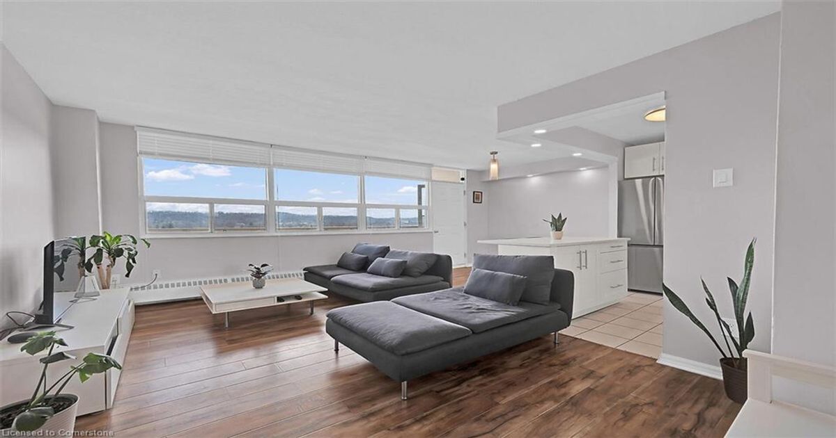 15 Albright Road  Hamilton