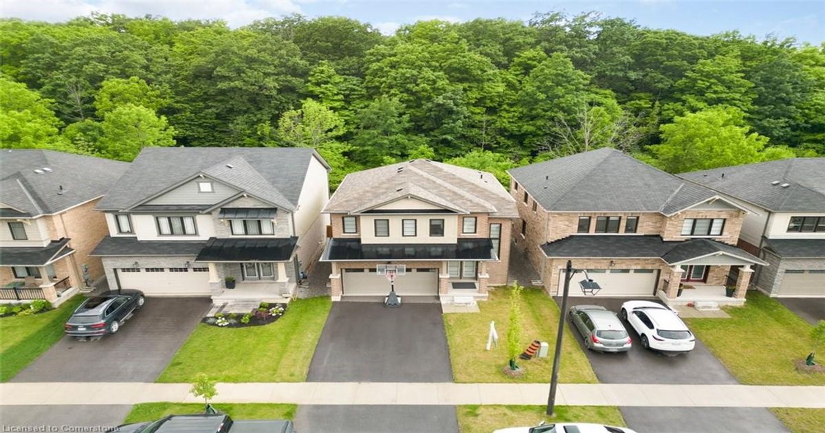 157 Cactus Crescent  Hamilton