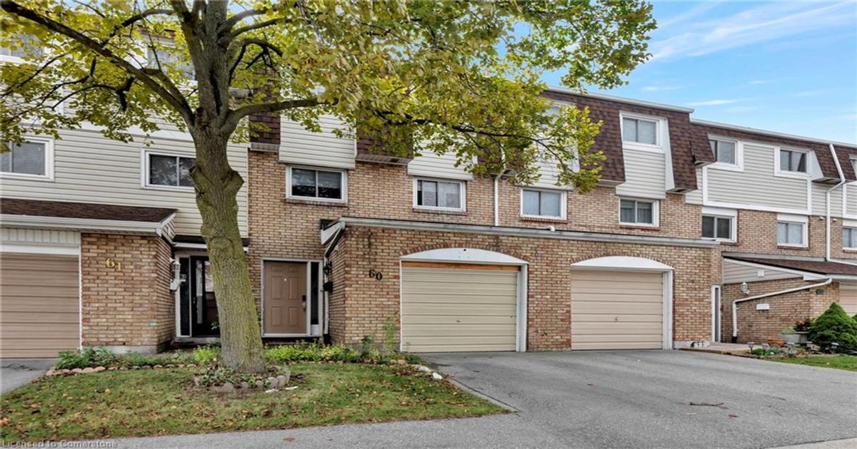 11 Harrisford Street  Hamilton