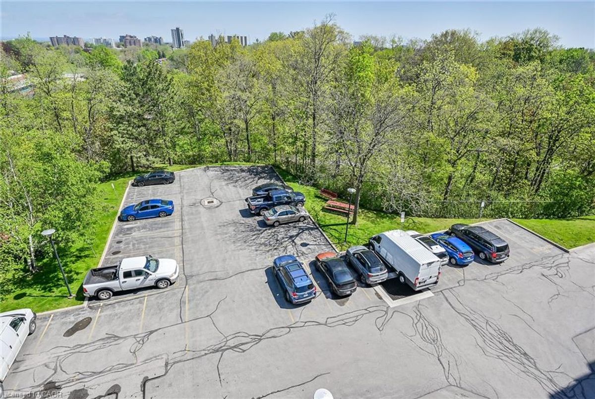 6 Village Green Boulevard Hamilton 6 Village Green Boulevard Hamilton