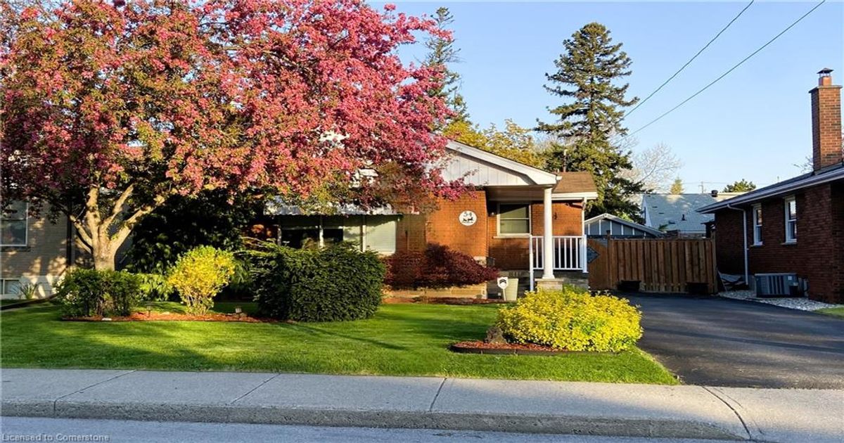 54 Sherwood Rise  Hamilton