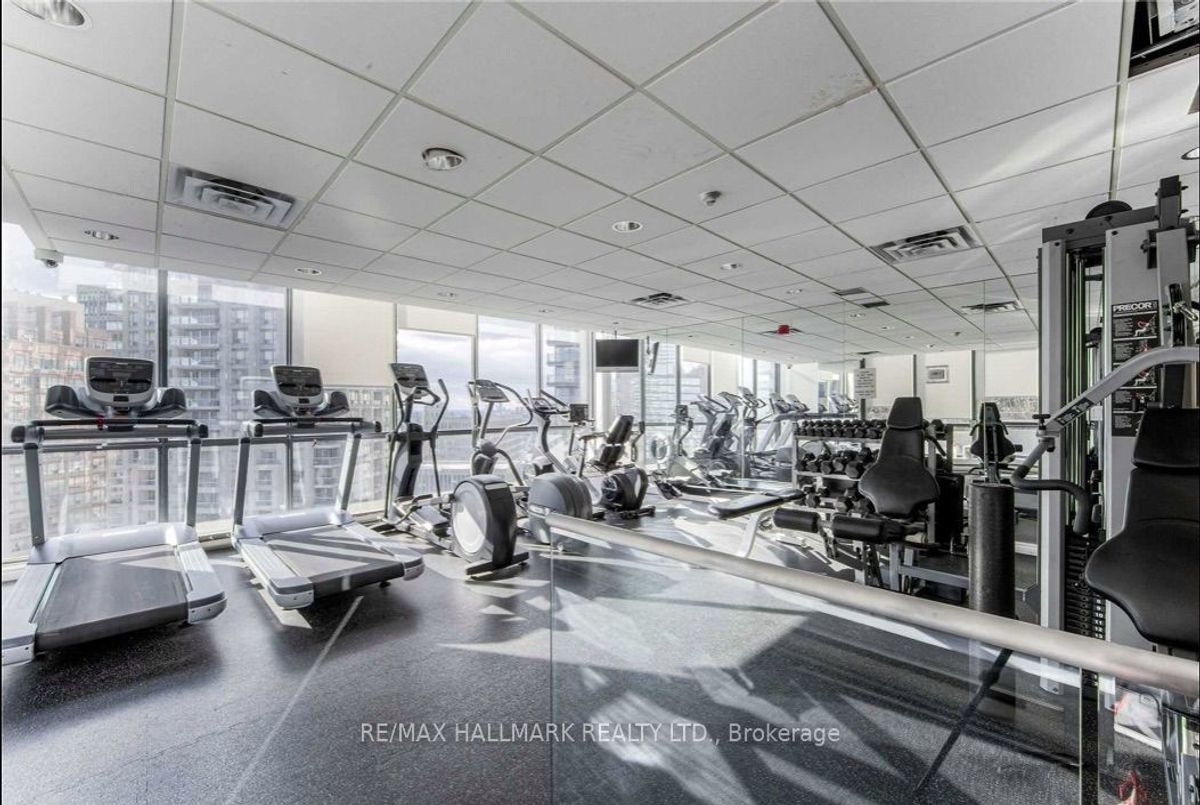 216-24 Wellesley Street W 216-24 Wellesley Street W Toronto C01