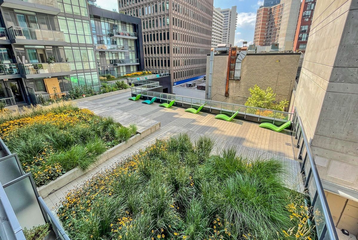 3105-30 Roehampton Avenue 3105-30 Roehampton Avenue Toronto C10