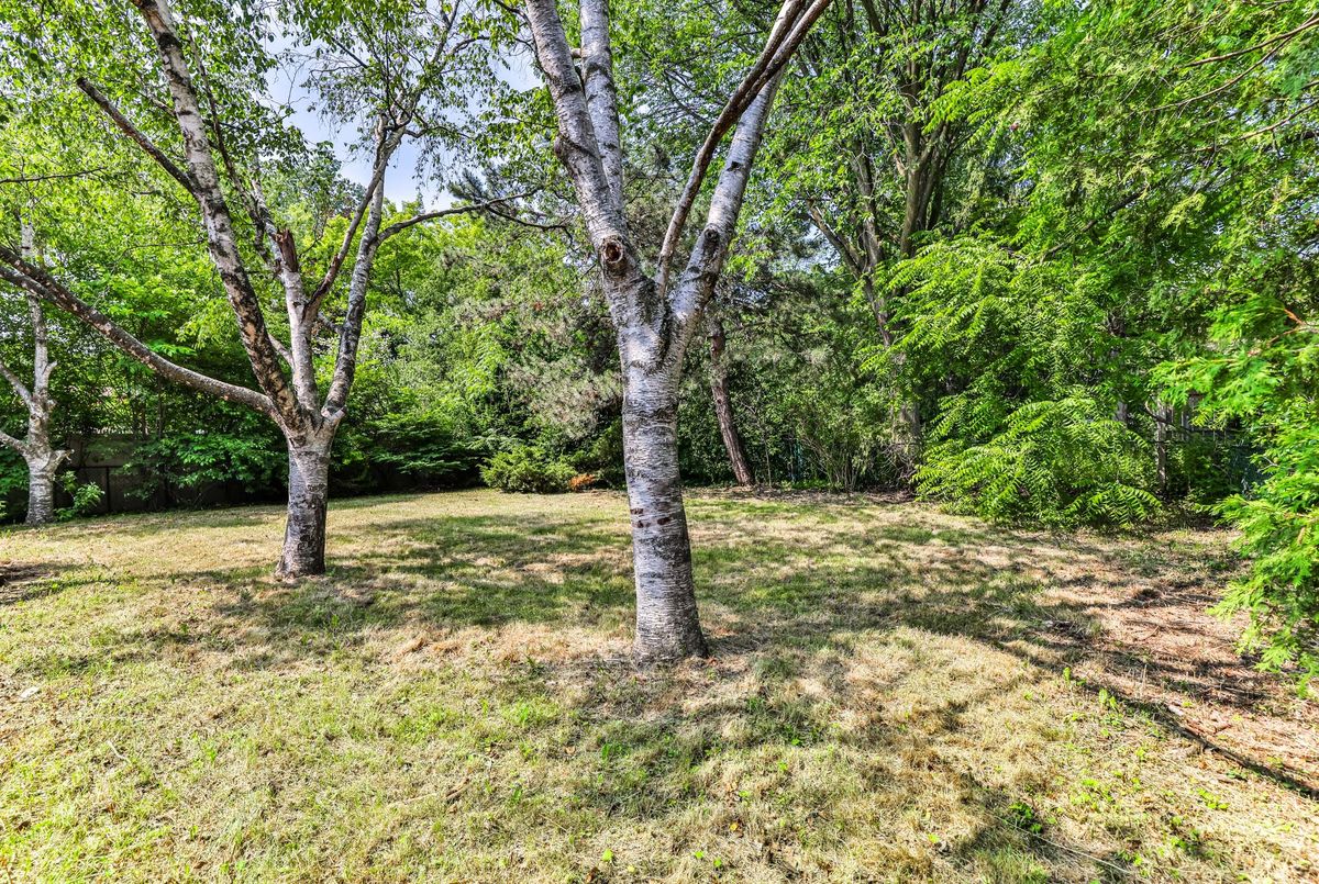 104 Maxome Avenue 104 Maxome Avenue Toronto C14