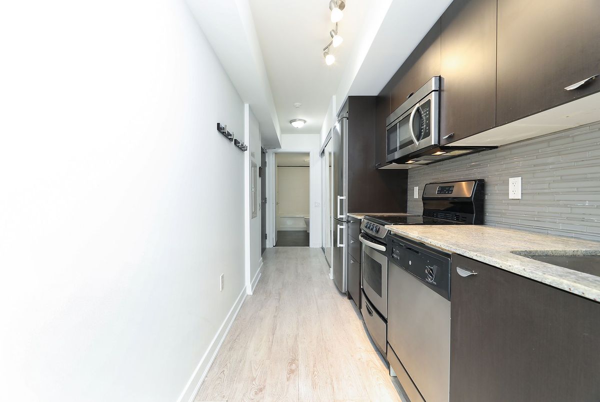 307E-78 Tecumseth Street 307E-78 Tecumseth Street Toronto C01