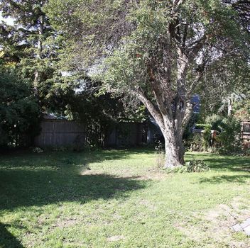 Residential Freehold 159 Yorkview Drive Toronto For {
  "AboveGradeFinishedArea": 0,
  "AboveGradeFinishedAreaSource": "",
  "AboveGradeFinishedAreaUnits": "",
  "Acreage": "",
  "Active": false,
  "Address": "159 Yorkview Drive",
  "AirConditioning": "Central Air",
  "AirConditioningYN": false,
  "Amps": "",
  "Appliances": "",
  "ApproxAge": "",
  "ApproxSquareFootage": "< 700",
  "Area": "Toronto",
  "AssessmentYear": "",
  "AssignmentYN": false,
  "AssociationAmenities": "",
  "AssociationFee": "",
  "AssociationFeeIncludes": "",
  "AssociationName": "",
  "AssociationYN": false,
  "Balcony": "",
  "Basement": "Separate Entrance",
  "BasementYN": false,
  "BathroomsFull": 0,
  "BathroomsHalf": 0,
  "Bedrooms": 1,
  "BedroomsDisplay": "1",
  "BedroomsPlus": 0,
  "BedroomsTotal": 1,
  "BelowGradeFinishedArea": 0,
  "BelowGradeFinishedAreaSource": "",
  "BelowGradeFinishedAreaUnits": "",
  "Board": "Toronto Regional Real Estate Board",
  "BuilderName": "",
  "BuildingAreaTotal": "",
  "BuildingAreaUnits": "",
  "BuildingName": "",
  "BusinessName": "",
  "BusinessType": "",
  "BuyerAgencyCompensation": "1/2 month+HST",
  "BuyerAgencyCompensationType": "",
  "BuyerAgentAOR": "",
  "BuyerAgentEmail": "",
  "BuyerAgentFullName": "",
  "BuyerAgentId": "",
  "BuyerAgentMlsId": "",
  "BuyerAgentPhone": "",
  "BuyerOfficeId": "",
  "BuyerOfficeMlsId": "",
  "BuyerOfficeName": "",
  "BuyerOfficePhone": "",
  "CarportSpaces": 0,
  "Category": "MLS",
  "ChattelsYN": false,
  "City": "Toronto C07",
  "ClassSearch": "Residential",
  "ClosedDate": "2026-09-01T00:00:00",
  "CoListAgentDesignation": "",
  "CoListAgentEmail": "",
  "CoListAgentID": "",
  "CoListAgentMLSID": "",
  "CoListAgentName": "",
  "CoListAgentPhone": "",
  "CoListOfficeID": "589700",
  "CoListOfficeMLSID": "589700",
  "CoListOfficeName": "HOMELIFE/BAYVIEW REALTY INC.",
  "CommercialCondoFee": "",
  "CommercialCondoFeeFrequency": "",
  "CommercialCondoFees": "",
  "Commission": "1/2 month+HST",
  "Community": "Willowdale West",
  "CommunityFeatures": "",
  "Condition": "",
  "ConditionalExpiryDate": "0001-01-01T00:00:00",
  "ConditionOfSale": "",
  "CondoCorpNumber": "",
  "ConsentToAdvertiseYN": true,
  "ConstructionMaterials": "Stucco (Plaster)",
  "ContactAfterExpiryYN": false,
  "ContractDate": "2026-06-03T00:00:00",
  "Cooling": "Central Air",
  "CoolingYN": false,
  "Country": "",
  "CoverPhoto": "https://media.remarketer.ca/PROPTX/C13236806-1.jpg?tr=di-propertynoimage_pj5ksb5iM,f-jpg,q-90",
  "CrossStreet": "Bathurst & Finch",
  "DaysOnMarket": 48,
  "DepositRequired": "",
  "Directions": "Yorkview Dr",
  "Disclosures": "",
  "DisplayAddress": "BSMNT2-159 Yorkview Drive",
  "DisplayAddressYN": true,
  "DistributeToInternetYN": true,
  "Drive": "",
  "Electric": "",
  "ElectricExpense": "",
  "ElectricOnPropertyYN": false,
  "ElectricYN": false,
  "ElementarySchool": "",
  "ElevatorYN": false,
  "Exclusions": "",
  "Expenses": "",
  "ExpiryDate": "2026-09-03T00:00:00",
  "Exposure": "",
  "Exterior": "",
  "ExteriorFeatures": "",
  "Extras": "",
  "FamilyRoom": "",
  "FireplaceTotal": 0,
  "FireplaceYN": false,
  "Flooring": "",
  "FloorPlans": "",
  "FoundationDetails": "Concrete Block",
  "Franchise": "",
  "FranchiseYN": false,
  "FurnishedYN": false,
  "GarageSpaces": 0,
  "GarageType": "Detached",
  "GarageYN": true,
  "GasYN": false,
  "Geometry": {
    "lat": 43.7719,
    "lon": -79.4387
  },
  "GymYN": false,
  "HeatingYN": false,
  "HeatSource": "Gas",
  "HeatType": "Forced Air",
  "HighSchool": "",
  "HoldoverDays": "120",
  "id": "C13236806_PROPTX",
  "IDX": "Y",
  "IDXYN": true,
  "Inclusions": "One parking spot on driveway, Fridge, Freezer, Stove, Microwave, Washer/Dryer",
  "InteriorFeatures": "None",
  "Kitchens": 1,
  "KitchensPlus": 0,
  "LandLeaseAmount": "",
  "LandLeaseYN": false,
  "LastStatus": "Lsd",
  "Latitude": 43.7719,
  "LaundryFeatures": "Shared",
  "LaundryLevel": "",
  "Lease": "",
  "LeaseAgreement": "12 Months",
  "LeaseAgreementYN": false,
  "LeaseFrequency": "",
  "LeaseTerm": "12 Months",
  "LegalDescription": "",
  "Level": "",
  "ListAgentDesignation": "",
  "ListAgentEmail": "",
  "ListAgentID": "9563257",
  "ListAgentMLSID": "9563257",
  "ListAgentName": "ANITA MOHAMMADZADEH, Broker",
  "ListAgentPhone": "",
  "ListAOR": "Toronto Regional Real Estate Board",
  "ListBrokerage": "HOMELIFE/BAYVIEW REALTY INC.",
  "ListingEntryDate": "2026-06-03T20:17:34",
  "ListingId": "C13236806",
  "ListingKey": "C13236806",
  "ListOfficeID": "589700",
  "ListOfficeMLSID": "589700",
  "ListOfficePhone": "",
  "ListPrice": 1490,
  "ListPricePerUnit": 0,
  "ListPriceUnit": "",
  "LivingArea": "< 700",
  "LivingAreaSource": "",
  "LivingAreaUnits": "",
  "Locker": "",
  "Longitude": -79.4387,
  "LotDepth": 0,
  "LotFeatures": "",
  "LotFront": 0,
  "LotIrregularities": "",
  "LotShape": "",
  "LotSizeArea": "",
  "LotSizeAreaUnits": "",
  "LotSizeCode": "",
  "LotSizeDimensions": "",
  "Maintenance": "",
  "Media": [
    {
      "id": "ce3cac7c-aa4a-4fd0-be9b-949ab202c21d-nw_PROPTX",
      "ListingId": "C13236806",
      "ListingKey": "C13236806",
      "MediaId": "ce3cac7c-aa4a-4fd0-be9b-949ab202c21d-nw",
      "ModificationTimestamp": "2026-06-03T20:17:34",
      "MediaOrder": 1,
      "Active": true,
      "MediaSize": "",
      "ResourceName": "Property",
      "ClassName": "ResidentialFree",
      "MediaDescription": "",
      "PreferredPhotoYN": true,
      "WaterMarkYN": false,
      "MediaName": "",
      "MediaCategory": "Photo",
      "MediaHTML": "",
      "MediaType": "image/jpeg",
      "MediaUrl": "https://trreb-image.ampre.ca/cjlXRnY3MBeXrGDrS8pBvg3ivGAd3BMNfcgVRZQ58fM/rs:fit:3840:3840/L3RycmViL2xpc3RpbmdzLzQzLzc0LzI0LzU1L3AvY2UzY2FjN2MtYWE0YS00ZmQwLWJlOWItOTQ5YWIyMDJjMjFkLmpwZw.jpg",
      "MediaWidth": "1920",
      "MediaHeight": "1281",
      "MediaStatus": "Active",
      "Source": "PROPTX",
      "OriginatingSystemName": "",
      "RTimestampSql": "2026-06-03T20:35:08.893"
    },
    {
      "id": "12a2008d-e426-4ccb-86ba-7447f9f13bd3-nw_PROPTX",
      "ListingId": "C13236806",
      "ListingKey": "C13236806",
      "MediaId": "12a2008d-e426-4ccb-86ba-7447f9f13bd3-nw",
      "ModificationTimestamp": "2026-06-03T20:17:34",
      "MediaOrder": 2,
      "Active": true,
      "MediaSize": "",
      "ResourceName": "Property",
      "ClassName": "ResidentialFree",
      "MediaDescription": "",
      "PreferredPhotoYN": false,
      "WaterMarkYN": false,
      "MediaName": "",
      "MediaCategory": "Photo",
      "MediaHTML": "",
      "MediaType": "image/jpeg",
      "MediaUrl": "https://trreb-image.ampre.ca/vMXf7Rg9Mcjmbst-twhNoWHoTVvyV3Nml79gLUjeN7w/rs:fit:3840:3840/L3RycmViL2xpc3RpbmdzLzQzLzc0LzI0LzU1L3AvMTJhMjAwOGQtZTQyNi00Y2NiLTg2YmEtNzQ0N2Y5ZjEzYmQzLmpwZw.jpg",
      "MediaWidth": "1920",
      "MediaHeight": "1281",
      "MediaStatus": "Active",
      "Source": "PROPTX",
      "OriginatingSystemName": "",
      "RTimestampSql": "2026-06-03T20:35:08.9"
    },
    {
      "id": "a68a9ef8-f678-4074-84f3-5a46c3f84ac6-nw_PROPTX",
      "ListingId": "C13236806",
      "ListingKey": "C13236806",
      "MediaId": "a68a9ef8-f678-4074-84f3-5a46c3f84ac6-nw",
      "ModificationTimestamp": "2026-06-03T20:17:34",
      "MediaOrder": 3,
      "Active": true,
      "MediaSize": "",
      "ResourceName": "Property",
      "ClassName": "ResidentialFree",
      "MediaDescription": "",
      "PreferredPhotoYN": false,
      "WaterMarkYN": false,
      "MediaName": "",
      "MediaCategory": "Photo",
      "MediaHTML": "",
      "MediaType": "image/jpeg",
      "MediaUrl": "https://trreb-image.ampre.ca/upEAMBZuK867IffHOx_iXNlZSxblVN8txS0bxT5noy4/rs:fit:3840:3840/L3RycmViL2xpc3RpbmdzLzQzLzc0LzI0LzU1L3AvYTY4YTllZjgtZjY3OC00MDc0LTg0ZjMtNWE0NmMzZjg0YWM2LmpwZw.jpg",
      "MediaWidth": "1920",
      "MediaHeight": "1281",
      "MediaStatus": "Active",
      "Source": "PROPTX",
      "OriginatingSystemName": "",
      "RTimestampSql": "2026-06-03T20:35:08.903"
    },
    {
      "id": "6609af5f-0811-47ed-a10c-d8303512644c-nw_PROPTX",
      "ListingId": "C13236806",
      "ListingKey": "C13236806",
      "MediaId": "6609af5f-0811-47ed-a10c-d8303512644c-nw",
      "ModificationTimestamp": "2026-06-03T20:17:34",
      "MediaOrder": 4,
      "Active": true,
      "MediaSize": "",
      "ResourceName": "Property",
      "ClassName": "ResidentialFree",
      "MediaDescription": "",
      "PreferredPhotoYN": false,
      "WaterMarkYN": false,
      "MediaName": "",
      "MediaCategory": "Photo",
      "MediaHTML": "",
      "MediaType": "image/jpeg",
      "MediaUrl": "https://trreb-image.ampre.ca/2nkqq4uKE5ycGB2yYUS62KSFelMLmt87WUWdfJ52kQQ/rs:fit:3840:3840/L3RycmViL2xpc3RpbmdzLzQzLzc0LzI0LzU1L3AvNjYwOWFmNWYtMDgxMS00N2VkLWExMGMtZDgzMDM1MTI2NDRjLmpwZw.jpg",
      "MediaWidth": "1920",
      "MediaHeight": "1281",
      "MediaStatus": "Active",
      "Source": "PROPTX",
      "OriginatingSystemName": "",
      "RTimestampSql": "2026-06-03T20:35:09.17"
    },
    {
      "id": "8c02b3b2-3e53-4142-ae10-682f3bfddd62-nw_PROPTX",
      "ListingId": "C13236806",
      "ListingKey": "C13236806",
      "MediaId": "8c02b3b2-3e53-4142-ae10-682f3bfddd62-nw",
      "ModificationTimestamp": "2026-06-03T20:17:34",
      "MediaOrder": 5,
      "Active": true,
      "MediaSize": "",
      "ResourceName": "Property",
      "ClassName": "ResidentialFree",
      "MediaDescription": "",
      "PreferredPhotoYN": false,
      "WaterMarkYN": false,
      "MediaName": "",
      "MediaCategory": "Photo",
      "MediaHTML": "",
      "MediaType": "image/jpeg",
      "MediaUrl": "https://trreb-image.ampre.ca/GKkryMW9RXvNK8LB8mMD8nmzXCsj-wWoBFZdZOAJOjI/rs:fit:3840:3840/L3RycmViL2xpc3RpbmdzLzQzLzc0LzI0LzU1L3AvOGMwMmIzYjItM2U1My00MTQyLWFlMTAtNjgyZjNiZmRkZDYyLmpwZw.jpg",
      "MediaWidth": "1920",
      "MediaHeight": "1281",
      "MediaStatus": "Active",
      "Source": "PROPTX",
      "OriginatingSystemName": "",
      "RTimestampSql": "2026-06-03T20:35:08.887"
    },
    {
      "id": "83dc82cd-e011-47cd-a351-9e9d74a82937-nw_PROPTX",
      "ListingId": "C13236806",
      "ListingKey": "C13236806",
      "MediaId": "83dc82cd-e011-47cd-a351-9e9d74a82937-nw",
      "ModificationTimestamp": "2026-06-03T20:17:34",
      "MediaOrder": 6,
      "Active": true,
      "MediaSize": "",
      "ResourceName": "Property",
      "ClassName": "ResidentialFree",
      "MediaDescription": "",
      "PreferredPhotoYN": false,
      "WaterMarkYN": false,
      "MediaName": "",
      "MediaCategory": "Photo",
      "MediaHTML": "",
      "MediaType": "image/jpeg",
      "MediaUrl": "https://trreb-image.ampre.ca/jDZd7zcsiQjcPcjd37RYWiEmw-v2eWkIPILMmNQbQ90/rs:fit:3840:3840/L3RycmViL2xpc3RpbmdzLzQzLzc0LzI0LzU1L3AvODNkYzgyY2QtZTAxMS00N2NkLWEzNTEtOWU5ZDc0YTgyOTM3LmpwZw.jpg",
      "MediaWidth": "1920",
      "MediaHeight": "1281",
      "MediaStatus": "Active",
      "Source": "PROPTX",
      "OriginatingSystemName": "",
      "RTimestampSql": "2026-06-03T20:35:08.91"
    },
    {
      "id": "e54c690b-8ddd-4869-86bd-42aaa4bedc06-nw_PROPTX",
      "ListingId": "C13236806",
      "ListingKey": "C13236806",
      "MediaId": "e54c690b-8ddd-4869-86bd-42aaa4bedc06-nw",
      "ModificationTimestamp": "2026-06-03T20:17:34",
      "MediaOrder": 7,
      "Active": true,
      "MediaSize": "",
      "ResourceName": "Property",
      "ClassName": "ResidentialFree",
      "MediaDescription": "",
      "PreferredPhotoYN": false,
      "WaterMarkYN": false,
      "MediaName": "",
      "MediaCategory": "Photo",
      "MediaHTML": "",
      "MediaType": "image/jpeg",
      "MediaUrl": "https://trreb-image.ampre.ca/wWTos04H66nNuMglun1fYDb_wYF5mBLgrAz-FuHGxK4/rs:fit:3840:3840/L3RycmViL2xpc3RpbmdzLzQzLzc0LzI0LzU1L3AvZTU0YzY5MGItOGRkZC00ODY5LTg2YmQtNDJhYWE0YmVkYzA2LmpwZw.jpg",
      "MediaWidth": "1920",
      "MediaHeight": "1281",
      "MediaStatus": "Active",
      "Source": "PROPTX",
      "OriginatingSystemName": "",
      "RTimestampSql": "2026-06-03T20:35:08.917"
    },
    {
      "id": "6ded3d64-e095-47f8-b805-a631d3f2ce44-nw_PROPTX",
      "ListingId": "C13236806",
      "ListingKey": "C13236806",
      "MediaId": "6ded3d64-e095-47f8-b805-a631d3f2ce44-nw",
      "ModificationTimestamp": "2026-06-03T20:17:34",
      "MediaOrder": 8,
      "Active": true,
      "MediaSize": "",
      "ResourceName": "Property",
      "ClassName": "ResidentialFree",
      "MediaDescription": "",
      "PreferredPhotoYN": false,
      "WaterMarkYN": false,
      "MediaName": "",
      "MediaCategory": "Photo",
      "MediaHTML": "",
      "MediaType": "image/jpeg",
      "MediaUrl": "https://trreb-image.ampre.ca/XqrvyjBAJUzqEYqhyRgQbRSFK9K5Wi1jp0VMO6cJncc/rs:fit:3840:3840/L3RycmViL2xpc3RpbmdzLzQzLzc0LzI0LzU1L3AvNmRlZDNkNjQtZTA5NS00N2Y4LWI4MDUtYTYzMWQzZjJjZTQ0LmpwZw.jpg",
      "MediaWidth": "1920",
      "MediaHeight": "1281",
      "MediaStatus": "Active",
      "Source": "PROPTX",
      "OriginatingSystemName": "",
      "RTimestampSql": "2026-06-03T20:35:08.923"
    },
    {
      "id": "b4af01d1-1b8c-42c1-8817-e3824bcbd680-nw_PROPTX",
      "ListingId": "C13236806",
      "ListingKey": "C13236806",
      "MediaId": "b4af01d1-1b8c-42c1-8817-e3824bcbd680-nw",
      "ModificationTimestamp": "2026-06-03T20:17:34",
      "MediaOrder": 9,
      "Active": true,
      "MediaSize": "",
      "ResourceName": "Property",
      "ClassName": "ResidentialFree",
      "MediaDescription": "",
      "PreferredPhotoYN": false,
      "WaterMarkYN": false,
      "MediaName": "",
      "MediaCategory": "Photo",
      "MediaHTML": "",
      "MediaType": "image/jpeg",
      "MediaUrl": "https://trreb-image.ampre.ca/8Hi3u2pRbhx59mnOLLNBw58o86ydIaLubKSbFDLhNlk/rs:fit:3840:3840/L3RycmViL2xpc3RpbmdzLzQzLzc0LzI0LzU1L3AvYjRhZjAxZDEtMWI4Yy00MmMxLTg4MTctZTM4MjRiY2JkNjgwLmpwZw.jpg",
      "MediaWidth": "1920",
      "MediaHeight": "1281",
      "MediaStatus": "Active",
      "Source": "PROPTX",
      "OriginatingSystemName": "",
      "RTimestampSql": "2026-06-03T20:35:08.93"
    },
    {
      "id": "b891c1b2-f07c-4bb1-9d06-c24a6ac87af4-nw_PROPTX",
      "ListingId": "C13236806",
      "ListingKey": "C13236806",
      "MediaId": "b891c1b2-f07c-4bb1-9d06-c24a6ac87af4-nw",
      "ModificationTimestamp": "2026-06-03T20:17:34",
      "MediaOrder": 10,
      "Active": true,
      "MediaSize": "",
      "ResourceName": "Property",
      "ClassName": "ResidentialFree",
      "MediaDescription": "",
      "PreferredPhotoYN": false,
      "WaterMarkYN": false,
      "MediaName": "",
      "MediaCategory": "Photo",
      "MediaHTML": "",
      "MediaType": "image/jpeg",
      "MediaUrl": "https://trreb-image.ampre.ca/PgO-kublqKI6CSOyR2372mktt2kAEctybTle60mzUU4/rs:fit:3840:3840/L3RycmViL2xpc3RpbmdzLzQzLzc0LzI0LzU1L3AvYjg5MWMxYjItZjA3Yy00YmIxLTlkMDYtYzI0YTZhYzg3YWY0LmpwZw.jpg",
      "MediaWidth": "1920",
      "MediaHeight": "1281",
      "MediaStatus": "Active",
      "Source": "PROPTX",
      "OriginatingSystemName": "",
      "RTimestampSql": "2026-06-03T20:35:08.933"
    },
    {
      "id": "04e28ffd-b5b6-4a35-9ab8-49acbf5b42bf-nw_PROPTX",
      "ListingId": "C13236806",
      "ListingKey": "C13236806",
      "MediaId": "04e28ffd-b5b6-4a35-9ab8-49acbf5b42bf-nw",
      "ModificationTimestamp": "2026-06-03T20:17:34",
      "MediaOrder": 11,
      "Active": true,
      "MediaSize": "",
      "ResourceName": "Property",
      "ClassName": "ResidentialFree",
      "MediaDescription": "",
      "PreferredPhotoYN": false,
      "WaterMarkYN": false,
      "MediaName": "",
      "MediaCategory": "Photo",
      "MediaHTML": "",
      "MediaType": "image/jpeg",
      "MediaUrl": "https://trreb-image.ampre.ca/VQTXiG3SPHHBNZxUg73rOGg7hHG9bKAXzGi4Br8fEpI/rs:fit:3840:3840/L3RycmViL2xpc3RpbmdzLzQzLzc0LzI0LzU1L3AvMDRlMjhmZmQtYjViNi00YTM1LTlhYjgtNDlhY2JmNWI0MmJmLmpwZw.jpg",
      "MediaWidth": "1920",
      "MediaHeight": "1281",
      "MediaStatus": "Active",
      "Source": "PROPTX",
      "OriginatingSystemName": "",
      "RTimestampSql": "2026-06-03T20:35:09.177"
    },
    {
      "id": "d91a19cb-3336-4b6d-938f-a8198a80a06f-nw_PROPTX",
      "ListingId": "C13236806",
      "ListingKey": "C13236806",
      "MediaId": "d91a19cb-3336-4b6d-938f-a8198a80a06f-nw",
      "ModificationTimestamp": "2026-06-03T20:17:34",
      "MediaOrder": 12,
      "Active": true,
      "MediaSize": "",
      "ResourceName": "Property",
      "ClassName": "ResidentialFree",
      "MediaDescription": "",
      "PreferredPhotoYN": false,
      "WaterMarkYN": false,
      "MediaName": "",
      "MediaCategory": "Photo",
      "MediaHTML": "",
      "MediaType": "image/jpeg",
      "MediaUrl": "https://trreb-image.ampre.ca/TGeRZN4a_EdwrftICPFy5fwv_0SILh1MhEwrArdQbvw/rs:fit:3840:3840/L3RycmViL2xpc3RpbmdzLzQzLzc0LzI0LzU1L3AvZDkxYTE5Y2ItMzMzNi00YjZkLTkzOGYtYTgxOThhODBhMDZmLmpwZw.jpg",
      "MediaWidth": "1920",
      "MediaHeight": "1281",
      "MediaStatus": "Active",
      "Source": "PROPTX",
      "OriginatingSystemName": "",
      "RTimestampSql": "2026-06-03T20:35:08.94"
    },
    {
      "id": "de8613d2-2df8-45c9-a2a7-31dc7e68519f-nw_PROPTX",
      "ListingId": "C13236806",
      "ListingKey": "C13236806",
      "MediaId": "de8613d2-2df8-45c9-a2a7-31dc7e68519f-nw",
      "ModificationTimestamp": "2026-06-03T20:17:34",
      "MediaOrder": 13,
      "Active": true,
      "MediaSize": "",
      "ResourceName": "Property",
      "ClassName": "ResidentialFree",
      "MediaDescription": "",
      "PreferredPhotoYN": false,
      "WaterMarkYN": false,
      "MediaName": "",
      "MediaCategory": "Photo",
      "MediaHTML": "",
      "MediaType": "image/jpeg",
      "MediaUrl": "https://trreb-image.ampre.ca/P0g_P_6Ddnsx4N-d38xpS5-M6fYP3pLDc45K3VuzMS8/rs:fit:3840:3840/L3RycmViL2xpc3RpbmdzLzQzLzc0LzI0LzU1L3AvZGU4NjEzZDItMmRmOC00NWM5LWEyYTctMzFkYzdlNjg1MTlmLmpwZw.jpg",
      "MediaWidth": "1920",
      "MediaHeight": "1281",
      "MediaStatus": "Active",
      "Source": "PROPTX",
      "OriginatingSystemName": "",
      "RTimestampSql": "2026-06-03T20:35:08.95"
    },
    {
      "id": "f063cd1a-32a0-4a53-9663-1878c938f161-nw_PROPTX",
      "ListingId": "C13236806",
      "ListingKey": "C13236806",
      "MediaId": "f063cd1a-32a0-4a53-9663-1878c938f161-nw",
      "ModificationTimestamp": "2026-06-03T20:17:34",
      "MediaOrder": 14,
      "Active": true,
      "MediaSize": "",
      "ResourceName": "Property",
      "ClassName": "ResidentialFree",
      "MediaDescription": "",
      "PreferredPhotoYN": false,
      "WaterMarkYN": false,
      "MediaName": "",
      "MediaCategory": "Photo",
      "MediaHTML": "",
      "MediaType": "image/jpeg",
      "MediaUrl": "https://trreb-image.ampre.ca/zP7QnEx9Xn0qgeK9g6WTo_wqMy5a_Bx9sYzGgXfsfZw/rs:fit:3840:3840/L3RycmViL2xpc3RpbmdzLzQzLzc0LzI0LzU1L3AvZjA2M2NkMWEtMzJhMC00YTUzLTk2NjMtMTg3OGM5MzhmMTYxLmpwZw.jpg",
      "MediaWidth": "1920",
      "MediaHeight": "1281",
      "MediaStatus": "Active",
      "Source": "PROPTX",
      "OriginatingSystemName": "",
      "RTimestampSql": "2026-06-03T20:35:08.957"
    },
    {
      "id": "5df253df-bbcd-4bac-a701-ca1b9cc28cfe-nw_PROPTX",
      "ListingId": "C13236806",
      "ListingKey": "C13236806",
      "MediaId": "5df253df-bbcd-4bac-a701-ca1b9cc28cfe-nw",
      "ModificationTimestamp": "2026-06-03T20:17:34",
      "MediaOrder": 15,
      "Active": true,
      "MediaSize": "",
      "ResourceName": "Property",
      "ClassName": "ResidentialFree",
      "MediaDescription": "",
      "PreferredPhotoYN": false,
      "WaterMarkYN": false,
      "MediaName": "",
      "MediaCategory": "Photo",
      "MediaHTML": "",
      "MediaType": "image/jpeg",
      "MediaUrl": "https://trreb-image.ampre.ca/1_SBz1p3JcbmwktJwut2pu0_wpX8ottbvO6YGJwxd54/rs:fit:3840:3840/L3RycmViL2xpc3RpbmdzLzQzLzc0LzI0LzU1L3AvNWRmMjUzZGYtYmJjZC00YmFjLWE3MDEtY2ExYjljYzI4Y2ZlLmpwZw.jpg",
      "MediaWidth": "1920",
      "MediaHeight": "1281",
      "MediaStatus": "Active",
      "Source": "PROPTX",
      "OriginatingSystemName": "",
      "RTimestampSql": "2026-06-03T20:35:08.99"
    },
    {
      "id": "e4298951-eac2-48ef-8f0f-ca8565063d8b-nw_PROPTX",
      "ListingId": "C13236806",
      "ListingKey": "C13236806",
      "MediaId": "e4298951-eac2-48ef-8f0f-ca8565063d8b-nw",
      "ModificationTimestamp": "2026-06-03T20:17:34",
      "MediaOrder": 16,
      "Active": true,
      "MediaSize": "",
      "ResourceName": "Property",
      "ClassName": "ResidentialFree",
      "MediaDescription": "",
      "PreferredPhotoYN": false,
      "WaterMarkYN": false,
      "MediaName": "",
      "MediaCategory": "Photo",
      "MediaHTML": "",
      "MediaType": "image/jpeg",
      "MediaUrl": "https://trreb-image.ampre.ca/uxkAPncVtEwtq8ZWLigUMzwojXc6XbLAMjGOxpx21Rk/rs:fit:3840:3840/L3RycmViL2xpc3RpbmdzLzQzLzc0LzI0LzU1L3AvZTQyOTg5NTEtZWFjMi00OGVmLThmMGYtY2E4NTY1MDYzZDhiLmpwZw.jpg",
      "MediaWidth": "1920",
      "MediaHeight": "1281",
      "MediaStatus": "Active",
      "Source": "PROPTX",
      "OriginatingSystemName": "",
      "RTimestampSql": "2026-06-03T20:35:09.01"
    },
    {
      "id": "b5e6bbbf-53d0-4db1-b25c-1956584173c3-nw_PROPTX",
      "ListingId": "C13236806",
      "ListingKey": "C13236806",
      "MediaId": "b5e6bbbf-53d0-4db1-b25c-1956584173c3-nw",
      "ModificationTimestamp": "2026-06-03T20:17:34",
      "MediaOrder": 17,
      "Active": true,
      "MediaSize": "",
      "ResourceName": "Property",
      "ClassName": "ResidentialFree",
      "MediaDescription": "",
      "PreferredPhotoYN": false,
      "WaterMarkYN": false,
      "MediaName": "",
      "MediaCategory": "Photo",
      "MediaHTML": "",
      "MediaType": "image/jpeg",
      "MediaUrl": "https://trreb-image.ampre.ca/LVY_mDeSjGzs1BZp7xYPqIfjAYmwqkikpf13yyeP2Xg/rs:fit:3840:3840/L3RycmViL2xpc3RpbmdzLzQzLzc0LzI0LzU1L3AvYjVlNmJiYmYtNTNkMC00ZGIxLWIyNWMtMTk1NjU4NDE3M2MzLmpwZw.jpg",
      "MediaWidth": "1920",
      "MediaHeight": "1281",
      "MediaStatus": "Active",
      "Source": "PROPTX",
      "OriginatingSystemName": "",
      "RTimestampSql": "2026-06-03T20:35:09.233"
    },
    {
      "id": "a53b64ac-a114-49cc-97b8-bcca8177e497-nw_PROPTX",
      "ListingId": "C13236806",
      "ListingKey": "C13236806",
      "MediaId": "a53b64ac-a114-49cc-97b8-bcca8177e497-nw",
      "ModificationTimestamp": "2026-06-03T20:17:34",
      "MediaOrder": 18,
      "Active": true,
      "MediaSize": "",
      "ResourceName": "Property",
      "ClassName": "ResidentialFree",
      "MediaDescription": "",
      "PreferredPhotoYN": false,
      "WaterMarkYN": false,
      "MediaName": "",
      "MediaCategory": "Photo",
      "MediaHTML": "",
      "MediaType": "image/jpeg",
      "MediaUrl": "https://trreb-image.ampre.ca/rYf8f_VHaqcaXQqceDHonBIZ2EkNLtAFUWznRHNmKSo/rs:fit:3840:3840/L3RycmViL2xpc3RpbmdzLzQzLzc0LzI0LzU1L3AvYTUzYjY0YWMtYTExNC00OWNjLTk3YjgtYmNjYTgxNzdlNDk3LmpwZw.jpg",
      "MediaWidth": "1920",
      "MediaHeight": "1281",
      "MediaStatus": "Active",
      "Source": "PROPTX",
      "OriginatingSystemName": "",
      "RTimestampSql": "2026-06-03T20:35:09.017"
    },
    {
      "id": "a4563503-55dd-400d-8d40-feb33d962645-nw_PROPTX",
      "ListingId": "C13236806",
      "ListingKey": "C13236806",
      "MediaId": "a4563503-55dd-400d-8d40-feb33d962645-nw",
      "ModificationTimestamp": "2026-06-03T20:17:34",
      "MediaOrder": 19,
      "Active": true,
      "MediaSize": "",
      "ResourceName": "Property",
      "ClassName": "ResidentialFree",
      "MediaDescription": "",
      "PreferredPhotoYN": false,
      "WaterMarkYN": false,
      "MediaName": "",
      "MediaCategory": "Photo",
      "MediaHTML": "",
      "MediaType": "image/jpeg",
      "MediaUrl": "https://trreb-image.ampre.ca/KrM_mgRC_CFPCQkF_JDbxEqkeIuR2C9gTV4LH2BoZZM/rs:fit:3840:3840/L3RycmViL2xpc3RpbmdzLzQzLzc0LzI0LzU1L3AvYTQ1NjM1MDMtNTVkZC00MDBkLThkNDAtZmViMzNkOTYyNjQ1LmpwZw.jpg",
      "MediaWidth": "1920",
      "MediaHeight": "1281",
      "MediaStatus": "Active",
      "Source": "PROPTX",
      "OriginatingSystemName": "",
      "RTimestampSql": "2026-06-03T20:35:09.023"
    },
    {
      "id": "f1210398-d8ea-4b25-93ba-9ad1a8c48507-nw_PROPTX",
      "ListingId": "C13236806",
      "ListingKey": "C13236806",
      "MediaId": "f1210398-d8ea-4b25-93ba-9ad1a8c48507-nw",
      "ModificationTimestamp": "2026-06-03T20:17:34",
      "MediaOrder": 20,
      "Active": true,
      "MediaSize": "",
      "ResourceName": "Property",
      "ClassName": "ResidentialFree",
      "MediaDescription": "",
      "PreferredPhotoYN": false,
      "WaterMarkYN": false,
      "MediaName": "",
      "MediaCategory": "Photo",
      "MediaHTML": "",
      "MediaType": "image/jpeg",
      "MediaUrl": "https://trreb-image.ampre.ca/adyqbT1uzYmash56Z4LeBOWzbg7ZhjfIz0VvJvHT5l4/rs:fit:3840:3840/L3RycmViL2xpc3RpbmdzLzQzLzc0LzI0LzU1L3AvZjEyMTAzOTgtZDhlYS00YjI1LTkzYmEtOWFkMWE4YzQ4NTA3LmpwZw.jpg",
      "MediaWidth": "1920",
      "MediaHeight": "1281",
      "MediaStatus": "Active",
      "Source": "PROPTX",
      "OriginatingSystemName": "",
      "RTimestampSql": "2026-06-03T20:35:09.03"
    },
    {
      "id": "1505e5d7-c8bd-4723-9d40-640d5fce9fa1-nw_PROPTX",
      "ListingId": "C13236806",
      "ListingKey": "C13236806",
      "MediaId": "1505e5d7-c8bd-4723-9d40-640d5fce9fa1-nw",
      "ModificationTimestamp": "2026-06-03T20:17:34",
      "MediaOrder": 21,
      "Active": true,
      "MediaSize": "",
      "ResourceName": "Property",
      "ClassName": "ResidentialFree",
      "MediaDescription": "",
      "PreferredPhotoYN": false,
      "WaterMarkYN": false,
      "MediaName": "",
      "MediaCategory": "Photo",
      "MediaHTML": "",
      "MediaType": "image/jpeg",
      "MediaUrl": "https://trreb-image.ampre.ca/gFk8RMYCs69DpaM07rwooOEgRM_z8BXZ9tQdLdFUUGI/rs:fit:3840:3840/L3RycmViL2xpc3RpbmdzLzQzLzc0LzI0LzU1L3AvMTUwNWU1ZDctYzhiZC00NzIzLTlkNDAtNjQwZDVmY2U5ZmExLmpwZw.jpg",
      "MediaWidth": "1920",
      "MediaHeight": "1281",
      "MediaStatus": "Active",
      "Source": "PROPTX",
      "OriginatingSystemName": "",
      "RTimestampSql": "2026-06-03T20:35:09.037"
    },
    {
      "id": "68819bea-a331-4037-af86-beb6111b772e-nw_PROPTX",
      "ListingId": "C13236806",
      "ListingKey": "C13236806",
      "MediaId": "68819bea-a331-4037-af86-beb6111b772e-nw",
      "ModificationTimestamp": "2026-06-03T20:17:34",
      "MediaOrder": 22,
      "Active": true,
      "MediaSize": "",
      "ResourceName": "Property",
      "ClassName": "ResidentialFree",
      "MediaDescription": "",
      "PreferredPhotoYN": false,
      "WaterMarkYN": false,
      "MediaName": "",
      "MediaCategory": "Photo",
      "MediaHTML": "",
      "MediaType": "image/jpeg",
      "MediaUrl": "https://trreb-image.ampre.ca/eGq7EFPFLfKRCf77l1EzoL5KfavWVDJQm7SOTmFfDbw/rs:fit:3840:3840/L3RycmViL2xpc3RpbmdzLzQzLzc0LzI0LzU1L3AvNjg4MTliZWEtYTMzMS00MDM3LWFmODYtYmViNjExMWI3NzJlLmpwZw.jpg",
      "MediaWidth": "1920",
      "MediaHeight": "1281",
      "MediaStatus": "Active",
      "Source": "PROPTX",
      "OriginatingSystemName": "",
      "RTimestampSql": "2026-06-03T20:35:09.04"
    },
    {
      "id": "46f11afd-8fe0-4739-b40f-88c0a565023e-nw_PROPTX",
      "ListingId": "C13236806",
      "ListingKey": "C13236806",
      "MediaId": "46f11afd-8fe0-4739-b40f-88c0a565023e-nw",
      "ModificationTimestamp": "2026-06-03T20:17:34",
      "MediaOrder": 23,
      "Active": true,
      "MediaSize": "",
      "ResourceName": "Property",
      "ClassName": "ResidentialFree",
      "MediaDescription": "",
      "PreferredPhotoYN": false,
      "WaterMarkYN": false,
      "MediaName": "",
      "MediaCategory": "Photo",
      "MediaHTML": "",
      "MediaType": "image/jpeg",
      "MediaUrl": "https://trreb-image.ampre.ca/KNNaQE4zyXDeiHRteccoEvSokM4pGqH9cTKcR6txnhI/rs:fit:3840:3840/L3RycmViL2xpc3RpbmdzLzQzLzc0LzI0LzU1L3AvNDZmMTFhZmQtOGZlMC00NzM5LWI0MGYtODhjMGE1NjUwMjNlLmpwZw.jpg",
      "MediaWidth": "1920",
      "MediaHeight": "1281",
      "MediaStatus": "Active",
      "Source": "PROPTX",
      "OriginatingSystemName": "",
      "RTimestampSql": "2026-06-03T20:35:09.06"
    },
    {
      "id": "9cbe8b95-4c2a-476f-869f-d9cee7757dd6-nw_PROPTX",
      "ListingId": "C13236806",
      "ListingKey": "C13236806",
      "MediaId": "9cbe8b95-4c2a-476f-869f-d9cee7757dd6-nw",
      "ModificationTimestamp": "2026-06-03T20:17:34",
      "MediaOrder": 24,
      "Active": true,
      "MediaSize": "",
      "ResourceName": "Property",
      "ClassName": "ResidentialFree",
      "MediaDescription": "",
      "PreferredPhotoYN": false,
      "WaterMarkYN": false,
      "MediaName": "",
      "MediaCategory": "Photo",
      "MediaHTML": "",
      "MediaType": "image/jpeg",
      "MediaUrl": "https://trreb-image.ampre.ca/XDV7rcQFwftfZzT4KnWfoE7muOBc7UDyfWdkbMvIPBI/rs:fit:3840:3840/L3RycmViL2xpc3RpbmdzLzQzLzc0LzI0LzU1L3AvOWNiZThiOTUtNGMyYS00NzZmLTg2OWYtZDljZWU3NzU3ZGQ2LmpwZw.jpg",
      "MediaWidth": "1920",
      "MediaHeight": "1281",
      "MediaStatus": "Active",
      "Source": "PROPTX",
      "OriginatingSystemName": "",
      "RTimestampSql": "2026-06-03T20:35:09.067"
    },
    {
      "id": "e51f706d-f10e-4bc7-af97-2360bc058af0-nw_PROPTX",
      "ListingId": "C13236806",
      "ListingKey": "C13236806",
      "MediaId": "e51f706d-f10e-4bc7-af97-2360bc058af0-nw",
      "ModificationTimestamp": "2026-06-03T20:17:34",
      "MediaOrder": 25,
      "Active": true,
      "MediaSize": "",
      "ResourceName": "Property",
      "ClassName": "ResidentialFree",
      "MediaDescription": "",
      "PreferredPhotoYN": false,
      "WaterMarkYN": false,
      "MediaName": "",
      "MediaCategory": "Photo",
      "MediaHTML": "",
      "MediaType": "image/jpeg",
      "MediaUrl": "https://trreb-image.ampre.ca/jW-Vwql-XCFlS1ENEob7T9CY1akSop5cgA_HrCJjJQ4/rs:fit:3840:3840/L3RycmViL2xpc3RpbmdzLzQzLzc0LzI0LzU1L3AvZTUxZjcwNmQtZjEwZS00YmM3LWFmOTctMjM2MGJjMDU4YWYwLmpwZw.jpg",
      "MediaWidth": "1920",
      "MediaHeight": "1281",
      "MediaStatus": "Active",
      "Source": "PROPTX",
      "OriginatingSystemName": "",
      "RTimestampSql": "2026-06-03T20:35:09.073"
    },
    {
      "id": "8228335a-0b28-402a-b9e4-6dc73ada30d3-nw_PROPTX",
      "ListingId": "C13236806",
      "ListingKey": "C13236806",
      "MediaId": "8228335a-0b28-402a-b9e4-6dc73ada30d3-nw",
      "ModificationTimestamp": "2026-06-03T20:17:34",
      "MediaOrder": 26,
      "Active": true,
      "MediaSize": "",
      "ResourceName": "Property",
      "ClassName": "ResidentialFree",
      "MediaDescription": "",
      "PreferredPhotoYN": false,
      "WaterMarkYN": false,
      "MediaName": "",
      "MediaCategory": "Photo",
      "MediaHTML": "",
      "MediaType": "image/jpeg",
      "MediaUrl": "https://trreb-image.ampre.ca/ZH5rSGtWAfiTF-eD3Krh4oHiMOTT5s4rtMiaMJ7qP2M/rs:fit:3840:3840/L3RycmViL2xpc3RpbmdzLzQzLzc0LzI0LzU1L3AvODIyODMzNWEtMGIyOC00MDJhLWI5ZTQtNmRjNzNhZGEzMGQzLmpwZw.jpg",
      "MediaWidth": "1920",
      "MediaHeight": "1281",
      "MediaStatus": "Active",
      "Source": "PROPTX",
      "OriginatingSystemName": "",
      "RTimestampSql": "2026-06-03T20:35:09.08"
    },
    {
      "id": "eb6d7b25-fdba-4a5d-8e8f-66c6bbafd15c-nw_PROPTX",
      "ListingId": "C13236806",
      "ListingKey": "C13236806",
      "MediaId": "eb6d7b25-fdba-4a5d-8e8f-66c6bbafd15c-nw",
      "ModificationTimestamp": "2026-06-03T20:17:34",
      "MediaOrder": 27,
      "Active": true,
      "MediaSize": "",
      "ResourceName": "Property",
      "ClassName": "ResidentialFree",
      "MediaDescription": "",
      "PreferredPhotoYN": false,
      "WaterMarkYN": false,
      "MediaName": "",
      "MediaCategory": "Photo",
      "MediaHTML": "",
      "MediaType": "image/jpeg",
      "MediaUrl": "https://trreb-image.ampre.ca/a2puoMmYxwm_4UjqP5maDprz2rEuzLD_dySDhbkZNy4/rs:fit:3840:3840/L3RycmViL2xpc3RpbmdzLzQzLzc0LzI0LzU1L3AvZWI2ZDdiMjUtZmRiYS00YTVkLThlOGYtNjZjNmJiYWZkMTVjLmpwZw.jpg",
      "MediaWidth": "1920",
      "MediaHeight": "1281",
      "MediaStatus": "Active",
      "Source": "PROPTX",
      "OriginatingSystemName": "",
      "RTimestampSql": "2026-06-03T20:35:09.087"
    },
    {
      "id": "9511f3de-6435-4159-b34c-66adac4d3726-nw_PROPTX",
      "ListingId": "C13236806",
      "ListingKey": "C13236806",
      "MediaId": "9511f3de-6435-4159-b34c-66adac4d3726-nw",
      "ModificationTimestamp": "2026-06-03T20:17:34",
      "MediaOrder": 28,
      "Active": true,
      "MediaSize": "",
      "ResourceName": "Property",
      "ClassName": "ResidentialFree",
      "MediaDescription": "",
      "PreferredPhotoYN": false,
      "WaterMarkYN": false,
      "MediaName": "",
      "MediaCategory": "Photo",
      "MediaHTML": "",
      "MediaType": "image/jpeg",
      "MediaUrl": "https://trreb-image.ampre.ca/k6hVuMRCN9xWkYsuly4R01wEYBn4HsOIrfeI5JVp1YY/rs:fit:3840:3840/L3RycmViL2xpc3RpbmdzLzQzLzc0LzI0LzU1L3AvOTUxMWYzZGUtNjQzNS00MTU5LWIzNGMtNjZhZGFjNGQzNzI2LmpwZw.jpg",
      "MediaWidth": "1920",
      "MediaHeight": "1281",
      "MediaStatus": "Active",
      "Source": "PROPTX",
      "OriginatingSystemName": "",
      "RTimestampSql": "2026-06-03T20:35:09.093"
    },
    {
      "id": "65d65d6d-1cee-4a4f-9cab-3d9620d68b93-nw_PROPTX",
      "ListingId": "C13236806",
      "ListingKey": "C13236806",
      "MediaId": "65d65d6d-1cee-4a4f-9cab-3d9620d68b93-nw",
      "ModificationTimestamp": "2026-06-03T20:17:34",
      "MediaOrder": 29,
      "Active": true,
      "MediaSize": "",
      "ResourceName": "Property",
      "ClassName": "ResidentialFree",
      "MediaDescription": "",
      "PreferredPhotoYN": false,
      "WaterMarkYN": false,
      "MediaName": "",
      "MediaCategory": "Photo",
      "MediaHTML": "",
      "MediaType": "image/jpeg",
      "MediaUrl": "https://trreb-image.ampre.ca/HYyySKyVqiNpPv-Lv23shwkg68SS7iacjvbkxWirE3I/rs:fit:3840:3840/L3RycmViL2xpc3RpbmdzLzQzLzc0LzI0LzU1L3AvNjVkNjVkNmQtMWNlZS00YTRmLTljYWItM2Q5NjIwZDY4YjkzLmpwZw.jpg",
      "MediaWidth": "1920",
      "MediaHeight": "1281",
      "MediaStatus": "Active",
      "Source": "PROPTX",
      "OriginatingSystemName": "",
      "RTimestampSql": "2026-06-03T20:35:09.1"
    },
    {
      "id": "d6314da2-e571-48a1-a35f-bdea788b469d-nw_PROPTX",
      "ListingId": "C13236806",
      "ListingKey": "C13236806",
      "MediaId": "d6314da2-e571-48a1-a35f-bdea788b469d-nw",
      "ModificationTimestamp": "2026-06-03T20:17:34",
      "MediaOrder": 30,
      "Active": true,
      "MediaSize": "",
      "ResourceName": "Property",
      "ClassName": "ResidentialFree",
      "MediaDescription": "",
      "PreferredPhotoYN": false,
      "WaterMarkYN": false,
      "MediaName": "",
      "MediaCategory": "Photo",
      "MediaHTML": "",
      "MediaType": "image/jpeg",
      "MediaUrl": "https://trreb-image.ampre.ca/cz1zcsb36Qh-Vw7Dlsa_Rjm0jcNYXa5A5Bb3zJZEN6A/rs:fit:3840:3840/L3RycmViL2xpc3RpbmdzLzQzLzc0LzI0LzU1L3AvZDYzMTRkYTItZTU3MS00OGExLWEzNWYtYmRlYTc4OGI0NjlkLmpwZw.jpg",
      "MediaWidth": "1920",
      "MediaHeight": "1281",
      "MediaStatus": "Active",
      "Source": "PROPTX",
      "OriginatingSystemName": "",
      "RTimestampSql": "2026-06-03T20:35:09.117"
    },
    {
      "id": "630da1af-5c6f-4682-9058-9e555248c57c-nw_PROPTX",
      "ListingId": "C13236806",
      "ListingKey": "C13236806",
      "MediaId": "630da1af-5c6f-4682-9058-9e555248c57c-nw",
      "ModificationTimestamp": "2026-06-03T20:17:34",
      "MediaOrder": 31,
      "Active": true,
      "MediaSize": "",
      "ResourceName": "Property",
      "ClassName": "ResidentialFree",
      "MediaDescription": "",
      "PreferredPhotoYN": false,
      "WaterMarkYN": false,
      "MediaName": "",
      "MediaCategory": "Photo",
      "MediaHTML": "",
      "MediaType": "image/jpeg",
      "MediaUrl": "https://trreb-image.ampre.ca/90yUldvaJ4FQPbRZO7KmGyDoRPsnVyxYt0AlQ8vk8nU/rs:fit:3840:3840/L3RycmViL2xpc3RpbmdzLzQzLzc0LzI0LzU1L3AvNjMwZGExYWYtNWM2Zi00NjgyLTkwNTgtOWU1NTUyNDhjNTdjLmpwZw.jpg",
      "MediaWidth": "1920",
      "MediaHeight": "1281",
      "MediaStatus": "Active",
      "Source": "PROPTX",
      "OriginatingSystemName": "",
      "RTimestampSql": "2026-06-03T20:35:09.12"
    },
    {
      "id": "e99df454-1a61-4802-a930-b9e1433cfa02-nw_PROPTX",
      "ListingId": "C13236806",
      "ListingKey": "C13236806",
      "MediaId": "e99df454-1a61-4802-a930-b9e1433cfa02-nw",
      "ModificationTimestamp": "2026-06-03T20:17:34",
      "MediaOrder": 32,
      "Active": true,
      "MediaSize": "",
      "ResourceName": "Property",
      "ClassName": "ResidentialFree",
      "MediaDescription": "",
      "PreferredPhotoYN": false,
      "WaterMarkYN": false,
      "MediaName": "",
      "MediaCategory": "Photo",
      "MediaHTML": "",
      "MediaType": "image/jpeg",
      "MediaUrl": "https://trreb-image.ampre.ca/OUn76ZofdGD7aFicWZb-SHFhT2mfKBpzDZlXfKtnmRY/rs:fit:3840:3840/L3RycmViL2xpc3RpbmdzLzQzLzc0LzI0LzU1L3AvZTk5ZGY0NTQtMWE2MS00ODAyLWE5MzAtYjllMTQzM2NmYTAyLmpwZw.jpg",
      "MediaWidth": "1920",
      "MediaHeight": "1281",
      "MediaStatus": "Active",
      "Source": "PROPTX",
      "OriginatingSystemName": "",
      "RTimestampSql": "2026-06-03T20:35:09.14"
    },
    {
      "id": "5ce63905-80f4-4788-a4e4-fb368ddc8bb1-nw_PROPTX",
      "ListingId": "C13236806",
      "ListingKey": "C13236806",
      "MediaId": "5ce63905-80f4-4788-a4e4-fb368ddc8bb1-nw",
      "ModificationTimestamp": "2026-06-03T20:17:34",
      "MediaOrder": 33,
      "Active": true,
      "MediaSize": "",
      "ResourceName": "Property",
      "ClassName": "ResidentialFree",
      "MediaDescription": "",
      "PreferredPhotoYN": false,
      "WaterMarkYN": false,
      "MediaName": "",
      "MediaCategory": "Photo",
      "MediaHTML": "",
      "MediaType": "image/jpeg",
      "MediaUrl": "https://trreb-image.ampre.ca/J3Ns7N179j9zIJPGGlJfFt1LREfg3yrkkhg1QiNj4EI/rs:fit:3840:3840/L3RycmViL2xpc3RpbmdzLzQzLzc0LzI0LzU1L3AvNWNlNjM5MDUtODBmNC00Nzg4LWE0ZTQtZmIzNjhkZGM4YmIxLmpwZw.jpg",
      "MediaWidth": "1920",
      "MediaHeight": "1281",
      "MediaStatus": "Active",
      "Source": "PROPTX",
      "OriginatingSystemName": "",
      "RTimestampSql": "2026-06-03T20:35:09.147"
    },
    {
      "id": "11dd3230-1a79-4098-9983-c0aacb67989f-nw_PROPTX",
      "ListingId": "C13236806",
      "ListingKey": "C13236806",
      "MediaId": "11dd3230-1a79-4098-9983-c0aacb67989f-nw",
      "ModificationTimestamp": "2026-06-03T20:17:34",
      "MediaOrder": 34,
      "Active": true,
      "MediaSize": "",
      "ResourceName": "Property",
      "ClassName": "ResidentialFree",
      "MediaDescription": "",
      "PreferredPhotoYN": false,
      "WaterMarkYN": false,
      "MediaName": "",
      "MediaCategory": "Photo",
      "MediaHTML": "",
      "MediaType": "image/jpeg",
      "MediaUrl": "https://trreb-image.ampre.ca/QSu-bXwD7oXG2AqZr4nKrfHTsw1c1gvRXEFYdBeBHu4/rs:fit:3840:3840/L3RycmViL2xpc3RpbmdzLzQzLzc0LzI0LzU1L3AvMTFkZDMyMzAtMWE3OS00MDk4LTk5ODMtYzBhYWNiNjc5ODlmLmpwZw.jpg",
      "MediaWidth": "1920",
      "MediaHeight": "1281",
      "MediaStatus": "Active",
      "Source": "PROPTX",
      "OriginatingSystemName": "",
      "RTimestampSql": "2026-06-03T20:35:09.15"
    },
    {
      "id": "3139c80b-2e43-44b6-8fe3-5fad617b00d0-nw_PROPTX",
      "ListingId": "C13236806",
      "ListingKey": "C13236806",
      "MediaId": "3139c80b-2e43-44b6-8fe3-5fad617b00d0-nw",
      "ModificationTimestamp": "2026-06-03T20:17:34",
      "MediaOrder": 35,
      "Active": true,
      "MediaSize": "",
      "ResourceName": "Property",
      "ClassName": "ResidentialFree",
      "MediaDescription": "",
      "PreferredPhotoYN": false,
      "WaterMarkYN": false,
      "MediaName": "",
      "MediaCategory": "Photo",
      "MediaHTML": "",
      "MediaType": "image/jpeg",
      "MediaUrl": "https://trreb-image.ampre.ca/KvtNt85E2HvduzaAfUwFFY4llpqEB80AZM8YQm3_XtY/rs:fit:3840:3840/L3RycmViL2xpc3RpbmdzLzQzLzc0LzI0LzU1L3AvMzEzOWM4MGItMmU0My00NGI2LThmZTMtNWZhZDYxN2IwMGQwLmpwZw.jpg",
      "MediaWidth": "1920",
      "MediaHeight": "1281",
      "MediaStatus": "Active",
      "Source": "PROPTX",
      "OriginatingSystemName": "",
      "RTimestampSql": "2026-06-03T20:35:09.24"
    },
    {
      "id": "6571d3e5-42a9-49bb-93b8-6d2a02eff652-nw_PROPTX",
      "ListingId": "C13236806",
      "ListingKey": "C13236806",
      "MediaId": "6571d3e5-42a9-49bb-93b8-6d2a02eff652-nw",
      "ModificationTimestamp": "2026-06-03T20:17:34",
      "MediaOrder": 36,
      "Active": true,
      "MediaSize": "",
      "ResourceName": "Property",
      "ClassName": "ResidentialFree",
      "MediaDescription": "",
      "PreferredPhotoYN": false,
      "WaterMarkYN": false,
      "MediaName": "",
      "MediaCategory": "Photo",
      "MediaHTML": "",
      "MediaType": "image/jpeg",
      "MediaUrl": "https://trreb-image.ampre.ca/-ZLMtyKunMnp-XWdZgXERT7-gWV9zert3Pd6UZHtUGk/rs:fit:3840:3840/L3RycmViL2xpc3RpbmdzLzQzLzc0LzI0LzU1L3AvNjU3MWQzZTUtNDJhOS00OWJiLTkzYjgtNmQyYTAyZWZmNjUyLmpwZw.jpg",
      "MediaWidth": "1920",
      "MediaHeight": "1281",
      "MediaStatus": "Active",
      "Source": "PROPTX",
      "OriginatingSystemName": "",
      "RTimestampSql": "2026-06-03T20:35:09.16"
    },
    {
      "id": "e18db75a-eb10-40ee-b6c7-38d2e2367da0-nw_PROPTX",
      "ListingId": "C13236806",
      "ListingKey": "C13236806",
      "MediaId": "e18db75a-eb10-40ee-b6c7-38d2e2367da0-nw",
      "ModificationTimestamp": "2026-06-03T20:17:34",
      "MediaOrder": 37,
      "Active": true,
      "MediaSize": "",
      "ResourceName": "Property",
      "ClassName": "ResidentialFree",
      "MediaDescription": "",
      "PreferredPhotoYN": false,
      "WaterMarkYN": false,
      "MediaName": "",
      "MediaCategory": "Photo",
      "MediaHTML": "",
      "MediaType": "image/jpeg",
      "MediaUrl": "https://trreb-image.ampre.ca/pzcIBgYyaS_mA3Sdy-xrkFxgaegUgkKXW6_zp4UlbpM/rs:fit:3840:3840/L3RycmViL2xpc3RpbmdzLzQzLzc0LzI0LzU1L3AvZTE4ZGI3NWEtZWIxMC00MGVlLWI2YzctMzhkMmUyMzY3ZGEwLmpwZw.jpg",
      "MediaWidth": "1920",
      "MediaHeight": "1280",
      "MediaStatus": "Active",
      "Source": "PROPTX",
      "OriginatingSystemName": "",
      "RTimestampSql": "2026-06-03T20:35:09.163"
    }
  ],
  "MediaChangeTimestamp": "2026-06-03T20:17:34",
  "MLS": "C13236806",
  "MLSLastStatus": "Leased",
  "MLSNumber": "C13236806",
  "MLSStatus": "Leased",
  "Municipality": "Toronto",
  "MunicipalityDistrict": "Toronto C07",
  "NewConstructionYN": false,
  "NumberOfBuildings": 0,
  "NumberOfUnitsTotal": 0,
  "OccupantType": "Tenant",
  "OpenHouses": [],
  "OpenHouseYN": false,
  "OriginalPrice": 1490,
  "OwnershipType": "",
  "ParcelNumber": "",
  "ParkingIncludedYN": false,
  "ParkingSpaces": 1,
  "PaymentFrequency": "",
  "PaymentMethod": "",
  "PetsPermitted": "",
  "PetsPermittedYN": false,
  "PhotoCount": 37,
  "PictureYN": false,
  "PoolFeatures": "None",
  "PoolYN": true,
  "PossessionDate": "2026-08-01",
  "PostalCode": "M2R 1K2",
  "PreviousListPrice": 0,
  "PriceChange": false,
  "PriceChangeTimestamp": "0001-01-01T00:00:00",
  "PriorMlsStatus": "Leased Conditional",
  "PrivateEntrance": "",
  "PrivateEntranceYN": true,
  "PrivateRemarks": "Please Submit Photo ID, Rental Application, Credit Report, Employment Letter and References with All Offers,",
  "PropertyAttachedYN": false,
  "PropertyCondition": "",
  "PropertyFeatures": "",
  "PropertyManagementCompany": "",
  "PropertyStyleSearch": "Bungalow",
  "PropertySubType": "Detached",
  "PropertySubTypeSearch": "Single Family",
  "PropertyType": "Residential Freehold",
  "PropertyTypeSearch": "Residential",
  "Province": "ON",
  "PurchaseContractDate": "2026-07-21T00:00:00",
  "RemarksForClients": "Renovated Finished 1 Bedroom Basement located in the desirable family neighborhood. Open concept, Ceramic and Hardwood flooring, Close to schools, TTC, Shopping, Park. Tenant pays 1/4 of utilities. 20/monthly for grass cutting and snow removal.",
  "Restricted": true,
  "RetirementYN": false,
  "RoadFrontageType": "",
  "RoadSurfaceType": "",
  "RollNumber": "",
  "Roof": "Shingles",
  "Rooms": [],
  "RoomsAboveGrade": 3,
  "RoomsBelowGrade": 0,
  "RoomsTotal": 0,
  "RoomsYN": false,
  "RTimestampSql": "2026-07-30T02:21:43.447",
  "SaleLease": "Lease",
  "SalesBrochure": "",
  "Sauna": "",
  "SaunaYN": false,
  "Sewers": "Sewer",
  "ShowingInstruction": "Lockbox",
  "SignOnPropertyYN": false,
  "Sold": true,
  "SoldDate": "2026-07-21T00:00:00",
  "SoldPrice": 1400,
  "Source": "PROPTX",
  "SourceSystemID": "A00001796",
  "SpaFeatures": "",
  "SpaYN": false,
  "SPLP": 94,
  "SqFtRangeMax": 700,
  "SqFtRangeMin": 700,
  "SqFtTotal": 0,
  "StandardStatus": "Closed",
  "Status": "U",
  "Stories": "",
  "StoriesTotal": "",
  "StreetAbbreviation": "",
  "StreetDirection": "",
  "StreetName": "Yorkview",
  "StreetNumber": "159",
  "StreetSuffix": "Drive",
  "StreetSuffixCode": "",
  "StructureType": "",
  "Style": "Bungalow",
  "SubLeaseYN": false,
  "Summary": "listingkey:C13236806 | mls_number:C13236806 | address:159 Yorkview Drive BSMNT2, Toronto, ON M2R 1K2 | community:Willowdale West | property_type:Residential Freehold | property_subtype:Detached | building_type:Detached | building_style:Bungalow | list_price:1490 | list_date:6/3/2026 8:17:34 PM | sold_price:1400 | sold_date:7/21/2026 12:00:00 AM | bed:1 | bath:1 | active:False | sold:True | source:PROPTX | transaction:Lease | listing_office:HOMELIFE/BAYVIEW REALTY INC. | thumbnail:https://media.remarketer.ca/PROPTX/C13236806-1.jpg?tr=di-propertynoimage_pj5ksb5iM,f-jpg,w-600,h-600,q-90,c-maintain_ratio,fo-center",
  "SurveyType": "None",
  "SurveyYear": "",
  "SurveyYN": false,
  "SuspendedDate": "0001-01-01T00:00:00",
  "TaxAssessedValue": "",
  "Taxes": 0,
  "TaxLegalDescription": "",
  "TaxYear": "",
  "TenantPays": "",
  "TerminatedDate": "0001-01-01T00:00:00",
  "Thumbnail": "https://media.remarketer.ca/PROPTX/C13236806-1.jpg?tr=di-propertynoimage_pj5ksb5iM,f-jpg,w-600,h-600,q-90,c-maintain_ratio,fo-center",
  "TimeShareYN": false,
  "TimestampSql": "2026-07-30T02:02:10",
  "TMI": "",
  "TotalArea": "",
  "TotalAreaUnit": "",
  "TotalParkingSpaces": 1,
  "Type": "Detached",
  "TypeSearch": "Detached",
  "UFFI": "",
  "UnitNumber": "BSMNT2",
  "Units": "",
  "UnparsedAddress": "159 Yorkview Drive BSMNT2, Toronto, ON M2R 1K2",
  "Use": "",
  "Utilities": "",
  "UtilityExpenses": "",
  "View": "",
  "VirtualTour3DURL": "",
  "VirtualTourURL": "",
  "VirtualTourURLUnbranded": "",
  "Volts": "",
  "Warranty": "",
  "WarrantyYN": false,
  "Washrooms": 1,
  "Water": "Municipal",
  "WaterBodyName": "",
  "WaterBodyType": "",
  "WaterExpense": "",
  "Waterfront": "",
  "WaterFrontage": "",
  "WaterFrontageFt": "",
  "WaterfrontYN": false,
  "WaterIncluded": "",
  "WaterSupplyTypes": "Municipal",
  "WaterView": "",
  "WaterYN": false,
  "WellCapacity": "",
  "WellCapacityUnits": "",
  "WellDepth": "",
  "WellDepthUnits": "",
  "Winterized": "",
  "YearBuilt": "",
  "Zoning": ""
}.(string)property[
