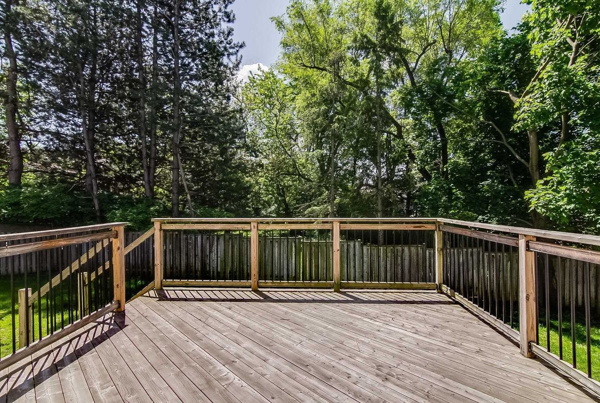 2B Carluke Cres 2B Carluke Cres Toronto