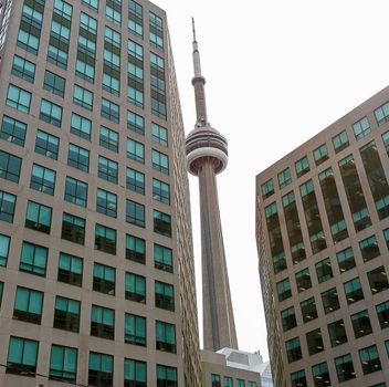 Condo 88 Blue Jays Way Toronto For {
  "AboveGradeFinishedArea": 0,
  "AboveGradeFinishedAreaSource": "",
  "AboveGradeFinishedAreaUnits": "",
  "Acreage": "",
  "Active": false,
  "Address": "88 Blue Jays Way",
  "AirConditioning": "Central Air",
  "AirConditioningYN": true,
  "Amps": "",
  "Appliances": "",
  "ApproxAge": "",
  "ApproxSquareFootage": "600-699",
  "Area": "Toronto",
  "AssessmentYear": "",
  "AssignmentYN": false,
  "AssociationAmenities": "",
  "AssociationFee": "",
  "AssociationFeeIncludes": "",
  "AssociationName": "",
  "AssociationYN": false,
  "Balcony": "",
  "Basement": "None",
  "BasementYN": false,
  "BathroomsFull": 0,
  "BathroomsHalf": 0,
  "Bedrooms": 1,
  "BedroomsDisplay": "1+1",
  "BedroomsPlus": 1,
  "BedroomsTotal": 0,
  "BelowGradeFinishedArea": 0,
  "BelowGradeFinishedAreaSource": "",
  "BelowGradeFinishedAreaUnits": "",
  "Board": "Toronto Regional real Estate Board",
  "BuilderName": "",
  "BuildingAreaTotal": "600-699",
  "BuildingAreaUnits": "Sq Ft",
  "BuildingName": "",
  "BusinessName": "",
  "BusinessType": "",
  "BuyerAgencyCompensation": "Half Month Rent",
  "BuyerAgencyCompensationType": "",
  "BuyerAgentAOR": "",
  "BuyerAgentEmail": "",
  "BuyerAgentFullName": "",
  "BuyerAgentId": "",
  "BuyerAgentMlsId": "",
  "BuyerAgentPhone": "",
  "BuyerOfficeId": "",
  "BuyerOfficeMlsId": "",
  "BuyerOfficeName": "",
  "BuyerOfficePhone": "",
  "CarportSpaces": 0,
  "Category": "MLS",
  "ChattelsYN": false,
  "City": "Toronto",
  "ClassSearch": "Condo",
  "ClosedDate": "2019-08-23T00:00:00",
  "CoListAgentDesignation": "",
  "CoListAgentEmail": "",
  "CoListAgentID": "",
  "CoListAgentMLSID": "",
  "CoListAgentName": "",
  "CoListAgentPhone": "905-237-0051",
  "CoListOfficeID": "099000",
  "CoListOfficeMLSID": "099000",
  "CoListOfficeName": "HOMELIFE FRONTIER REALTY INC., BROKERAGE",
  "CommercialCondoFee": "",
  "CommercialCondoFeeFrequency": "",
  "CommercialCondoFees": "",
  "Commission": "Half Month Rent",
  "Community": "Waterfront Communities C1",
  "CommunityFeatures": "",
  "Condition": "",
  "ConditionalExpiryDate": "0001-01-01T00:00:00",
  "ConditionOfSale": "",
  "CondoCorpNumber": "",
  "ConsentToAdvertiseYN": false,
  "ConstructionMaterials": "",
  "ContactAfterExpiryYN": false,
  "ContractDate": "2019-07-04T00:00:00",
  "Cooling": "Central Air",
  "CoolingYN": true,
  "Country": "",
  "CoverPhoto": "https://media.remarketer.ca/PROPTX/C4507125-1.jpg?tr=di-propertynoimage_pj5ksb5iM,f-jpg,q-90",
  "CrossStreet": "King St West/Blue Jays Way",
  "DaysOnMarket": 50,
  "DepositRequired": "",
  "Directions": "",
  "Disclosures": "",
  "DisplayAddress": "3301-88 Blue Jays Way",
  "DisplayAddressYN": true,
  "DistributeToInternetYN": true,
  "Drive": "",
  "Electric": "",
  "ElectricExpense": "",
  "ElectricOnPropertyYN": false,
  "ElectricYN": false,
  "ElementarySchool": "",
  "ElevatorYN": false,
  "Exclusions": "",
  "Expenses": "",
  "ExpiryDate": "2019-10-30T00:00:00",
  "Exposure": "",
  "Exterior": "",
  "ExteriorFeatures": "",
  "Extras": "All Built In Appliances And Washer And Dryer Include. Move In Condition*",
  "FamilyRoom": "",
  "FireplaceTotal": 0,
  "FireplaceYN": false,
  "Flooring": "",
  "FloorPlans": "",
  "FoundationDetails": "",
  "Franchise": "",
  "FranchiseYN": false,
  "FurnishedYN": false,
  "GarageSpaces": 0.0,
  "GarageType": "None",
  "GarageYN": false,
  "GasYN": false,
  "Geometry": {
    "lon": -79.3919,
    "lat": 43.6452
  },
  "GymYN": false,
  "HeatingYN": false,
  "HeatSource": "Electric",
  "HeatType": "Heat Pump",
  "HighSchool": "",
  "HoldoverDays": "",
  "id": "C4507125_PROPTX",
  "IDX": "N",
  "IDXYN": false,
  "Inclusions": "",
  "InteriorFeatures": "",
  "Kitchens": 1,
  "KitchensPlus": 0,
  "LandLeaseAmount": "",
  "LandLeaseYN": false,
  "LastStatus": "Lsd",
  "Latitude": 43.6452,
  "LaundryFeatures": "",
  "LaundryLevel": "",
  "Lease": "",
  "LeaseAgreement": "",
  "LeaseAgreementYN": false,
  "LeaseFrequency": "",
  "LeaseTerm": "",
  "LegalDescription": "",
  "Level": "",
  "ListAgentDesignation": "",
  "ListAgentEmail": "",
  "ListAgentID": "9521557",
  "ListAgentMLSID": "9521557",
  "ListAgentName": "TONY KHANI, Broker",
  "ListAgentPhone": "905-237-0051",
  "ListAOR": "",
  "ListBrokerage": "HOMELIFE FRONTIER REALTY INC., BROKERAGE",
  "ListingEntryDate": "2019-07-04T00:00:00",
  "ListingId": "C4507125",
  "ListingKey": "C4507125",
  "ListOfficeID": "099000",
  "ListOfficeMLSID": "099000",
  "ListOfficePhone": "905-237-0051",
  "ListPrice": 2700,
  "ListPricePerUnit": 0,
  "ListPriceUnit": "",
  "LivingArea": "600-699",
  "LivingAreaSource": "",
  "LivingAreaUnits": "",
  "Locker": "Owned",
  "Longitude": -79.3919,
  "LotDepth": 0,
  "LotFeatures": "",
  "LotFront": 0,
  "LotIrregularities": "",
  "LotShape": "",
  "LotSizeArea": "",
  "LotSizeAreaUnits": "",
  "LotSizeCode": "",
  "LotSizeDimensions": "",
  "Maintenance": "",
  "Media": [],
  "MediaChangeTimestamp": "2019-08-26T22:19:21",
  "MLS": "C4507125",
  "MLSLastStatus": "Leased",
  "MLSNumber": "C4507125",
  "MLSStatus": "Leased",
  "Municipality": "Toronto",
  "MunicipalityDistrict": "Toronto C01",
  "NewConstructionYN": false,
  "NumberOfBuildings": 0,
  "NumberOfUnitsTotal": 0,
  "OccupantType": "",
  "OpenHouses": [],
  "OpenHouseYN": false,
  "OriginalPrice": 2700,
  "OwnershipType": "",
  "ParcelNumber": "",
  "ParkingIncludedYN": false,
  "ParkingSpaces": 0,
  "PaymentFrequency": "",
  "PaymentMethod": "",
  "PetsPermitted": "N",
  "PetsPermittedYN": false,
  "PhotoCount": 17,
  "PictureYN": false,
  "PoolFeatures": "",
  "PoolYN": false,
  "PossessionDate": "2019-08-01 00:00:00.0",
  "PostalCode": "M5V2G3",
  "PreviousListPrice": 2700,
  "PriceChange": false,
  "PriceChangeTimestamp": "0001-01-01T00:00:00",
  "PriorMlsStatus": "Lsd",
  "PrivateEntrance": "",
  "PrivateEntranceYN": false,
  "PrivateRemarks": "",
  "PropertyAttachedYN": false,
  "PropertyCondition": "",
  "PropertyFeatures": "",
  "PropertyManagementCompany": "",
  "PropertyStyleSearch": "Apartment",
  "PropertySubType": "Condo Apt",
  "PropertySubTypeSearch": "Condo",
  "PropertyType": "Condo",
  "PropertyTypeSearch": "Residential",
  "Province": "Ontario",
  "PublicRemarks": "Bisha Residences & Boutique Hotel Located In The Centre Of The Entertainment District On King St/Blue Jays Way. Rooftop Lounge/ Cabana, Restaurant/ Cafe, Fitness Studio",
  "PurchaseContractDate": "2019-08-23T00:00:00",
  "RemarksForClients": "Bisha Residences & Boutique Hotel Located In The Centre Of The Entertainment District On King St/Blue Jays Way. Rooftop Lounge/ Cabana, Restaurant/ Cafe, Fitness Studio",
  "Restricted": true,
  "RetirementYN": false,
  "RoadFrontageType": "",
  "RoadSurfaceType": "",
  "RollNumber": "",
  "Roof": "",
  "Rooms": [],
  "RoomsAboveGrade": 0,
  "RoomsBelowGrade": 0,
  "RoomsTotal": 0,
  "RoomsYN": false,
  "RTimestampSql": "2021-06-07T13:58:09.66",
  "SaleLease": "Lease",
  "SalesBrochure": "",
  "Sauna": "",
  "SaunaYN": false,
  "Sewers": "",
  "ShowingInstruction": "",
  "SignOnPropertyYN": false,
  "Sold": true,
  "SoldDate": "2019-08-23T00:00:00",
  "SoldPrice": 2700,
  "Source": "PROPTX",
  "SourceSystemID": "",
  "SpaFeatures": "",
  "SpaYN": false,
  "SPLP": 100,
  "SqFtRangeMax": 699,
  "SqFtRangeMin": 600,
  "SqFtTotal": 0,
  "StandardStatus": "",
  "Status": "U",
  "Stories": "",
  "StoriesTotal": "",
  "StreetAbbreviation": "",
  "StreetDirection": "",
  "StreetName": "Blue Jays",
  "StreetNumber": "88",
  "StreetSuffix": "Way",
  "StreetSuffixCode": "",
  "StructureType": "",
  "Style": "Apartment",
  "SubLeaseYN": false,
  "Summary": "listingkey:C4507125 | mls_number:C4507125 | community:Waterfront Communities C1 | property_type:Condo | property_subtype:Condo Apt | building_type:Condo Apt | building_style:Apartment | list_price:2700 | list_date:7/4/2019 12:00:00 AM | sold_price:2700 | sold_date:8/23/2019 12:00:00 AM | bed:1+1 | bath:1 | active:False | sold:True | source:PROPTX | transaction:Lease | listing_office:HOMELIFE FRONTIER REALTY INC., BROKERAGE | thumbnail:https://media.remarketer.ca/PROPTX/C4507125-1.jpg?tr=di-propertynoimage_pj5ksb5iM,f-jpg,w-600,h-600,q-90,c-maintain_ratio,fo-center",
  "SurveyType": "",
  "SurveyYear": "",
  "SurveyYN": false,
  "SuspendedDate": "0001-01-01T00:00:00",
  "TaxAssessedValue": "",
  "Taxes": 0,
  "TaxLegalDescription": "",
  "TaxYear": "",
  "TenantPays": "",
  "TerminatedDate": "0001-01-01T00:00:00",
  "Thumbnail": "https://media.remarketer.ca/PROPTX/C4507125-1.jpg?tr=di-propertynoimage_pj5ksb5iM,f-jpg,w-600,h-600,q-90,c-maintain_ratio,fo-center",
  "TimeShareYN": false,
  "TimestampSql": "2019-08-26T22:19:21",
  "TMI": "",
  "TotalArea": "600-699",
  "TotalAreaUnit": "",
  "TotalParkingSpaces": 0,
  "Type": "Condo Apt",
  "TypeSearch": "Apartment Unit",
  "UFFI": "",
  "UnitNumber": "3301",
  "Units": "",
  "UnparsedAddress": "",
  "Use": "",
  "Utilities": "",
  "UtilityExpenses": "",
  "View": "",
  "VirtualTour3DURL": "",
  "VirtualTourURL": "",
  "VirtualTourURLUnbranded": "",
  "Volts": "",
  "Warranty": "",
  "WarrantyYN": false,
  "Washrooms": 1,
  "Water": "",
  "WaterBodyName": "",
  "WaterBodyType": "",
  "WaterExpense": "",
  "Waterfront": "",
  "WaterFrontage": "",
  "WaterFrontageFt": "",
  "WaterfrontYN": false,
  "WaterIncluded": "",
  "WaterSupplyTypes": "",
  "WaterView": "",
  "WaterYN": false,
  "WellCapacity": "",
  "WellCapacityUnits": "",
  "WellDepth": "",
  "WellDepthUnits": "",
  "Winterized": "",
  "YearBuilt": "",
  "Zoning": ""
}.(string)property[