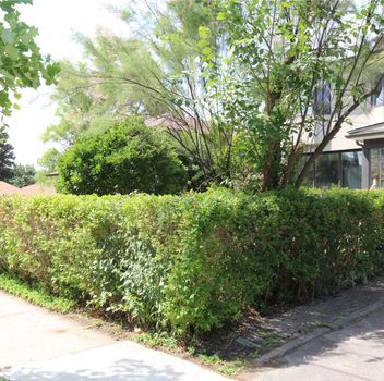 Residential 8 Gatehead Rd Toronto For {
  "AboveGradeFinishedArea": 0,
  "AboveGradeFinishedAreaSource": "",
  "AboveGradeFinishedAreaUnits": "",
  "Acreage": "",
  "Active": false,
  "Address": "8 Gatehead Rd",
  "AirConditioning": "Central Air",
  "AirConditioningYN": true,
  "Amps": "",
  "Appliances": "",
  "ApproxAge": "",
  "ApproxSquareFootage": "",
  "Area": "Toronto",
  "AssessmentYear": "",
  "AssignmentYN": false,
  "AssociationAmenities": "",
  "AssociationFee": "",
  "AssociationFeeIncludes": "",
  "AssociationName": "",
  "AssociationYN": false,
  "Balcony": "",
  "Basement": "Fin W/O, Seperate Entrance",
  "BasementYN": false,
  "BathroomsFull": 0,
  "BathroomsHalf": 0,
  "Bedrooms": 6,
  "BedroomsDisplay": "6+2",
  "BedroomsPlus": 2,
  "BedroomsTotal": 0,
  "BelowGradeFinishedArea": 0,
  "BelowGradeFinishedAreaSource": "",
  "BelowGradeFinishedAreaUnits": "",
  "Board": "Toronto Regional real Estate Board",
  "BuilderName": "",
  "BuildingAreaTotal": "",
  "BuildingAreaUnits": "Sq Ft",
  "BuildingName": "",
  "BusinessName": "",
  "BusinessType": "",
  "BuyerAgencyCompensation": "2.5%+Hst",
  "BuyerAgencyCompensationType": "",
  "BuyerAgentAOR": "",
  "BuyerAgentEmail": "",
  "BuyerAgentFullName": "",
  "BuyerAgentId": "",
  "BuyerAgentMlsId": "",
  "BuyerAgentPhone": "",
  "BuyerOfficeId": "",
  "BuyerOfficeMlsId": "",
  "BuyerOfficeName": "",
  "BuyerOfficePhone": "",
  "CarportSpaces": 0,
  "Category": "MLS",
  "ChattelsYN": false,
  "City": "Toronto",
  "ClassSearch": "Residential",
  "ClosedDate": "0001-01-01T00:00:00",
  "CoListAgentDesignation": "",
  "CoListAgentEmail": "",
  "CoListAgentID": "",
  "CoListAgentMLSID": "",
  "CoListAgentName": "",
  "CoListAgentPhone": "",
  "CoListOfficeID": "",
  "CoListOfficeMLSID": "",
  "CoListOfficeName": "5I5J REALTY INC., BROKERAGE",
  "CommercialCondoFee": "",
  "CommercialCondoFeeFrequency": "",
  "CommercialCondoFees": "",
  "Commission": "2.5%+Hst",
  "Community": "Bayview Village",
  "CommunityFeatures": "",
  "Condition": "",
  "ConditionalExpiryDate": "0001-01-01T00:00:00",
  "ConditionOfSale": "",
  "CondoCorpNumber": "",
  "ConsentToAdvertiseYN": false,
  "ConstructionMaterials": "",
  "ContactAfterExpiryYN": false,
  "ContractDate": "2022-08-05T00:00:00",
  "Cooling": "Central Air",
  "CoolingYN": true,
  "Country": "",
  "CoverPhoto": "https://media.remarketer.ca/PROPTX/C5722886-1.jpg?tr=di-propertynoimage_pj5ksb5iM,f-jpg,q-90",
  "CrossStreet": "Finch & Alamosa& Leslie",
  "DaysOnMarket": 6,
  "DepositRequired": "",
  "Directions": "",
  "Disclosures": "",
  "DisplayAddress": "8 Gatehead Rd",
  "DisplayAddressYN": true,
  "DistributeToInternetYN": true,
  "Drive": "",
  "Electric": "",
  "ElectricExpense": "",
  "ElectricOnPropertyYN": false,
  "ElectricYN": false,
  "ElementarySchool": "",
  "ElevatorYN": false,
  "Exclusions": "",
  "Expenses": "",
  "ExpiryDate": "2022-10-05T00:00:00",
  "Exposure": "",
  "Exterior": "",
  "ExteriorFeatures": "",
  "Extras": "Premier Samsung 4 French Door Fridge 2016, 5 Burner Gas Stove 2016, Miele Dishwasher 2016, Samsung Front Load Washer & Dryer 2016, Included 3 Kitchens Existing Appliances. Cac, Furnace, All Existing Elfs, Hwt Rental.",
  "FamilyRoom": "",
  "FireplaceTotal": 0,
  "FireplaceYN": false,
  "Flooring": "",
  "FloorPlans": "",
  "FoundationDetails": "",
  "Franchise": "",
  "FranchiseYN": false,
  "FurnishedYN": false,
  "GarageSpaces": 2.0,
  "GarageType": "Built-In",
  "GarageYN": false,
  "GasYN": false,
  "Geometry": {
    "lon": -79.3702,
    "lat": 43.78323
  },
  "GymYN": false,
  "HeatingYN": false,
  "HeatSource": "Gas",
  "HeatType": "Forced Air",
  "HighSchool": "",
  "HoldoverDays": "",
  "id": "C5722886_PROPTX",
  "IDX": "N",
  "IDXYN": false,
  "Inclusions": "",
  "InteriorFeatures": "",
  "Kitchens": 3,
  "KitchensPlus": 0,
  "LandLeaseAmount": "",
  "LandLeaseYN": false,
  "LastStatus": "Ter",
  "Latitude": 43.78323,
  "LaundryFeatures": "",
  "LaundryLevel": "",
  "Lease": "",
  "LeaseAgreement": "",
  "LeaseAgreementYN": false,
  "LeaseFrequency": "",
  "LeaseTerm": "",
  "LegalDescription": "",
  "Level": "",
  "ListAgentDesignation": "",
  "ListAgentEmail": "",
  "ListAgentID": "",
  "ListAgentMLSID": "",
  "ListAgentName": "",
  "ListAgentPhone": "",
  "ListAOR": "",
  "ListBrokerage": "5I5J REALTY INC., BROKERAGE",
  "ListingEntryDate": "2022-08-05T00:00:00",
  "ListingId": "C5722886",
  "ListingKey": "C5722886",
  "ListOfficeID": "",
  "ListOfficeMLSID": "",
  "ListOfficePhone": "",
  "ListPrice": 2380000,
  "ListPricePerUnit": 0,
  "ListPriceUnit": "",
  "LivingArea": "",
  "LivingAreaSource": "",
  "LivingAreaUnits": "",
  "Locker": "",
  "Longitude": -79.3702,
  "LotDepth": 101.75,
  "LotFeatures": "",
  "LotFront": 59.17,
  "LotIrregularities": "",
  "LotShape": "",
  "LotSizeArea": "",
  "LotSizeAreaUnits": "",
  "LotSizeCode": "",
  "LotSizeDimensions": "",
  "Maintenance": "",
  "Media": [],
  "MediaChangeTimestamp": "2022-08-11T17:53:50",
  "MLS": "C5722886",
  "MLSLastStatus": "Terminated",
  "MLSNumber": "C5722886",
  "MLSStatus": "Terminated",
  "Municipality": "Toronto",
  "MunicipalityDistrict": "Toronto C15",
  "NewConstructionYN": false,
  "NumberOfBuildings": 0,
  "NumberOfUnitsTotal": 0,
  "OccupantType": "",
  "OpenHouses": [],
  "OpenHouseYN": false,
  "OriginalPrice": 2580000,
  "OwnershipType": "",
  "ParcelNumber": "",
  "ParkingIncludedYN": false,
  "ParkingSpaces": 4,
  "PaymentFrequency": "",
  "PaymentMethod": "",
  "PetsPermitted": "",
  "PetsPermittedYN": false,
  "PhotoCount": 32,
  "PictureYN": false,
  "PoolFeatures": "None",
  "PoolYN": true,
  "PossessionDate": "",
  "PostalCode": "M2J2P5",
  "PreviousListPrice": 2580000,
  "PriceChange": true,
  "PriceChangeTimestamp": "0001-01-01T00:00:00",
  "PriorMlsStatus": "Ter",
  "PrivateEntrance": "",
  "PrivateEntranceYN": false,
  "PrivateRemarks": "",
  "PropertyAttachedYN": false,
  "PropertyCondition": "",
  "PropertyFeatures": "",
  "PropertyManagementCompany": "",
  "PropertyStyleSearch": "Sidesplit",
  "PropertySubType": "Detached",
  "PropertySubTypeSearch": "Single Family",
  "PropertyType": "Residential",
  "PropertyTypeSearch": "Residential",
  "Province": "Ontario",
  "PublicRemarks": "Excellent Location On Quiet Crescent. Welcome To This Well Maintained Beautiful And Luxurious House Situated On 59.17X101.75 Ft Lot. Sidesplit 5 With Extra Kitchen & 3 Bedrooms On Upper Level, The Suite Is Good For Investment. Finished Bright & Sunny Bsmt. W/O Entrance. Kitchen W/Premium Quartz Counter Top, Custom Built Solid Wood Cabinets, Eat-In Central Island 2016, Hardwood Flooring Throughout,  New Paint 2022, New Roof 2022, Steps To Parks, Schools & Bayview Village.",
  "PurchaseContractDate": "0001-01-01T00:00:00",
  "RemarksForClients": "Excellent Location On Quiet Crescent. Welcome To This Well Maintained Beautiful And Luxurious House Situated On 59.17X101.75 Ft Lot. Sidesplit 5 With Extra Kitchen & 3 Bedrooms On Upper Level, The Suite Is Good For Investment. Finished Bright & Sunny Bsmt. W/O Entrance. Kitchen W/Premium Quartz Counter Top, Custom Built Solid Wood Cabinets, Eat-In Central Island 2016, Hardwood Flooring Throughout, New Paint 2022, New Roof 2022, Steps To Parks, Schools & Bayview Village.",
  "Restricted": true,
  "RetirementYN": false,
  "RoadFrontageType": "",
  "RoadSurfaceType": "",
  "RollNumber": "",
  "Roof": "",
  "Rooms": [],
  "RoomsAboveGrade": 0,
  "RoomsBelowGrade": 0,
  "RoomsTotal": 0,
  "RoomsYN": false,
  "RTimestampSql": "2022-08-15T16:24:09.667",
  "SaleLease": "Sale",
  "SalesBrochure": "",
  "Sauna": "",
  "SaunaYN": false,
  "Sewers": "Sewers",
  "ShowingInstruction": "",
  "SignOnPropertyYN": false,
  "Sold": false,
  "SoldDate": "0001-01-01T00:00:00",
  "SoldPrice": 0,
  "Source": "PROPTX",
  "SourceSystemID": "",
  "SpaFeatures": "",
  "SpaYN": false,
  "SPLP": 100,
  "SqFtRangeMax": 0,
  "SqFtRangeMin": 0,
  "SqFtTotal": 0,
  "StandardStatus": "",
  "Status": "U",
  "Stories": "",
  "StoriesTotal": "",
  "StreetAbbreviation": "",
  "StreetDirection": "",
  "StreetName": "Gatehead",
  "StreetNumber": "8",
  "StreetSuffix": "Rd",
  "StreetSuffixCode": "",
  "StructureType": "",
  "Style": "Sidesplit 5",
  "SubLeaseYN": false,
  "Summary": "listingkey:C5722886 | mls_number:C5722886 | community:Bayview Village | property_type:Residential | property_subtype:Detached | building_type:Detached | building_style:Sidesplit 5 | list_price:2380000 | list_date:8/5/2022 12:00:00 AM | sold_price:0 | sold_date:1/1/0001 12:00:00 AM | bed:6+2 | bath:4 | active:False | sold:False | source:PROPTX | transaction:Sale | listing_office:5I5J REALTY INC., BROKERAGE | thumbnail:https://media.remarketer.ca/PROPTX/C5722886-1.jpg?tr=di-propertynoimage_pj5ksb5iM,f-jpg,w-600,h-600,q-90,c-maintain_ratio,fo-center",
  "SurveyType": "",
  "SurveyYear": "",
  "SurveyYN": false,
  "SuspendedDate": "0001-01-01T00:00:00",
  "TaxAssessedValue": "",
  "Taxes": 6700,
  "TaxLegalDescription": "",
  "TaxYear": "2022",
  "TenantPays": "",
  "TerminatedDate": "0001-01-01T00:00:00",
  "Thumbnail": "https://media.remarketer.ca/PROPTX/C5722886-1.jpg?tr=di-propertynoimage_pj5ksb5iM,f-jpg,w-600,h-600,q-90,c-maintain_ratio,fo-center",
  "TimeShareYN": false,
  "TimestampSql": "2022-08-11T17:53:50",
  "TMI": "",
  "TotalArea": "",
  "TotalAreaUnit": "",
  "TotalParkingSpaces": 0,
  "Type": "Detached",
  "TypeSearch": "Detached",
  "UFFI": "",
  "UnitNumber": "",
  "Units": "",
  "UnparsedAddress": "",
  "Use": "",
  "Utilities": "",
  "UtilityExpenses": "",
  "View": "",
  "VirtualTour3DURL": "",
  "VirtualTourURL": "",
  "VirtualTourURLUnbranded": "",
  "Volts": "",
  "Warranty": "",
  "WarrantyYN": false,
  "Washrooms": 4,
  "Water": "",
  "WaterBodyName": "",
  "WaterBodyType": "",
  "WaterExpense": "",
  "Waterfront": "",
  "WaterFrontage": "",
  "WaterFrontageFt": "",
  "WaterfrontYN": false,
  "WaterIncluded": "",
  "WaterSupplyTypes": "",
  "WaterView": "",
  "WaterYN": false,
  "WellCapacity": "",
  "WellCapacityUnits": "",
  "WellDepth": "",
  "WellDepthUnits": "",
  "Winterized": "",
  "YearBuilt": "",
  "Zoning": ""
}.(string)property[
