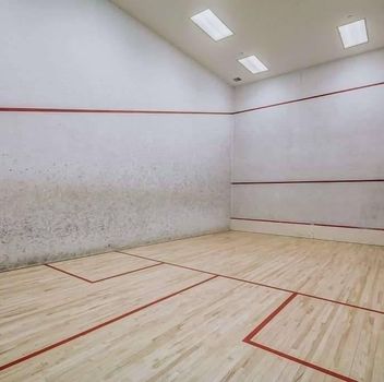 Condo 1101 Steeles Ave W Toronto For {
  "AboveGradeFinishedArea": 0,
  "AboveGradeFinishedAreaSource": "",
  "AboveGradeFinishedAreaUnits": "",
  "Acreage": "",
  "Active": false,
  "Address": "1101 Steeles Ave W",
  "AirConditioning": "Central Air",
  "AirConditioningYN": true,
  "Amps": "",
  "Appliances": "",
  "ApproxAge": "",
  "ApproxSquareFootage": "1000-1199",
  "Area": "Toronto",
  "AssessmentYear": "",
  "AssignmentYN": false,
  "AssociationAmenities": "",
  "AssociationFee": "",
  "AssociationFeeIncludes": "",
  "AssociationName": "",
  "AssociationYN": false,
  "Balcony": "",
  "Basement": "None",
  "BasementYN": false,
  "BathroomsFull": 0,
  "BathroomsHalf": 0,
  "Bedrooms": 2,
  "BedroomsDisplay": "2",
  "BedroomsPlus": 0,
  "BedroomsTotal": 0,
  "BelowGradeFinishedArea": 0,
  "BelowGradeFinishedAreaSource": "",
  "BelowGradeFinishedAreaUnits": "",
  "Board": "Toronto Regional real Estate Board",
  "BuilderName": "",
  "BuildingAreaTotal": "1000-1199",
  "BuildingAreaUnits": "Sq Ft",
  "BuildingName": "",
  "BusinessName": "",
  "BusinessType": "",
  "BuyerAgencyCompensation": "Half Months Rent Plus Hst",
  "BuyerAgencyCompensationType": "",
  "BuyerAgentAOR": "",
  "BuyerAgentEmail": "",
  "BuyerAgentFullName": "",
  "BuyerAgentId": "",
  "BuyerAgentMlsId": "",
  "BuyerAgentPhone": "",
  "BuyerOfficeId": "",
  "BuyerOfficeMlsId": "",
  "BuyerOfficeName": "",
  "BuyerOfficePhone": "",
  "CarportSpaces": 0,
  "Category": "MLS",
  "ChattelsYN": false,
  "City": "Toronto",
  "ClassSearch": "Condo",
  "ClosedDate": "2023-02-09T00:00:00",
  "CoListAgentDesignation": "",
  "CoListAgentEmail": "",
  "CoListAgentID": "",
  "CoListAgentMLSID": "",
  "CoListAgentName": "",
  "CoListAgentPhone": "905-764-7111",
  "CoListOfficeID": "248500",
  "CoListOfficeMLSID": "248500",
  "CoListOfficeName": "CENTURY 21 HERITAGE GROUP LTD., BROKERAGE",
  "CommercialCondoFee": "",
  "CommercialCondoFeeFrequency": "",
  "CommercialCondoFees": "",
  "Commission": "Half Months Rent Plus Hst",
  "Community": "Westminster-Branson",
  "CommunityFeatures": "",
  "Condition": "",
  "ConditionalExpiryDate": "0001-01-01T00:00:00",
  "ConditionOfSale": "",
  "CondoCorpNumber": "",
  "ConsentToAdvertiseYN": false,
  "ConstructionMaterials": "",
  "ContactAfterExpiryYN": false,
  "ContractDate": "2022-12-05T00:00:00",
  "Cooling": "Central Air",
  "CoolingYN": true,
  "Country": "",
  "CoverPhoto": "https://media.remarketer.ca/PROPTX/C5844143-1.jpg?tr=di-propertynoimage_pj5ksb5iM,f-jpg,q-90",
  "CrossStreet": "Bathurst And Steeles",
  "DaysOnMarket": 66,
  "DepositRequired": "",
  "Directions": "",
  "Disclosures": "",
  "DisplayAddress": "909-1101 Steeles Ave W",
  "DisplayAddressYN": true,
  "DistributeToInternetYN": true,
  "Drive": "",
  "Electric": "",
  "ElectricExpense": "",
  "ElectricOnPropertyYN": false,
  "ElectricYN": false,
  "ElementarySchool": "",
  "ElevatorYN": false,
  "Exclusions": "",
  "Expenses": "",
  "ExpiryDate": "2023-12-31T00:00:00",
  "Exposure": "",
  "Exterior": "",
  "ExteriorFeatures": "",
  "Extras": "Existing-Fridge,Stove.Clothes Washer And Dryer, Electric Light Fixtures. Window Blinds, 1 Parking.  Includes All Utilities And Cable Provided By The Building, Easy To Show.",
  "FamilyRoom": "",
  "FireplaceTotal": 0,
  "FireplaceYN": false,
  "Flooring": "",
  "FloorPlans": "",
  "FoundationDetails": "",
  "Franchise": "",
  "FranchiseYN": false,
  "FurnishedYN": false,
  "GarageSpaces": 1.0,
  "GarageType": "Undergrnd",
  "GarageYN": false,
  "GasYN": false,
  "Geometry": {
    "lon": -79.44814,
    "lat": 43.79048
  },
  "GymYN": false,
  "HeatingYN": false,
  "HeatSource": "Gas",
  "HeatType": "Forced Air",
  "HighSchool": "",
  "HoldoverDays": "",
  "id": "C5844143_PROPTX",
  "IDX": "N",
  "IDXYN": false,
  "Inclusions": "",
  "InteriorFeatures": "",
  "Kitchens": 1,
  "KitchensPlus": 0,
  "LandLeaseAmount": "",
  "LandLeaseYN": false,
  "LastStatus": "Lsd",
  "Latitude": 43.79048,
  "LaundryFeatures": "",
  "LaundryLevel": "",
  "Lease": "",
  "LeaseAgreement": "",
  "LeaseAgreementYN": false,
  "LeaseFrequency": "",
  "LeaseTerm": "",
  "LegalDescription": "",
  "Level": "",
  "ListAgentDesignation": "",
  "ListAgentEmail": "",
  "ListAgentID": "1811047",
  "ListAgentMLSID": "1811047",
  "ListAgentName": "AMIR HAJEE, Salesperson",
  "ListAgentPhone": "905-764-7111",
  "ListAOR": "",
  "ListBrokerage": "CENTURY 21 HERITAGE GROUP LTD., BROKERAGE",
  "ListingEntryDate": "2022-12-05T00:00:00",
  "ListingId": "C5844143",
  "ListingKey": "C5844143",
  "ListOfficeID": "248500",
  "ListOfficeMLSID": "248500",
  "ListOfficePhone": "905-764-7111",
  "ListPrice": 3000,
  "ListPricePerUnit": 0,
  "ListPriceUnit": "",
  "LivingArea": "1000-1199",
  "LivingAreaSource": "",
  "LivingAreaUnits": "",
  "Locker": "None",
  "Longitude": -79.44814,
  "LotDepth": 0,
  "LotFeatures": "",
  "LotFront": 0,
  "LotIrregularities": "",
  "LotShape": "",
  "LotSizeArea": "",
  "LotSizeAreaUnits": "",
  "LotSizeCode": "",
  "LotSizeDimensions": "",
  "Maintenance": "0.00",
  "Media": [],
  "MediaChangeTimestamp": "2023-02-10T16:10:44",
  "MLS": "C5844143",
  "MLSLastStatus": "Leased",
  "MLSNumber": "C5844143",
  "MLSStatus": "Leased",
  "Municipality": "Toronto",
  "MunicipalityDistrict": "Toronto C07",
  "NewConstructionYN": false,
  "NumberOfBuildings": 0,
  "NumberOfUnitsTotal": 0,
  "OccupantType": "",
  "OpenHouses": [],
  "OpenHouseYN": false,
  "OriginalPrice": 3200,
  "OwnershipType": "",
  "ParcelNumber": "",
  "ParkingIncludedYN": false,
  "ParkingSpaces": 1,
  "PaymentFrequency": "",
  "PaymentMethod": "",
  "PetsPermitted": "N",
  "PetsPermittedYN": false,
  "PhotoCount": 27,
  "PictureYN": false,
  "PoolFeatures": "",
  "PoolYN": false,
  "PossessionDate": "",
  "PostalCode": "M2R3W5",
  "PreviousListPrice": 3200,
  "PriceChange": true,
  "PriceChangeTimestamp": "0001-01-01T00:00:00",
  "PriorMlsStatus": "Lsd",
  "PrivateEntrance": "",
  "PrivateEntranceYN": false,
  "PrivateRemarks": "",
  "PropertyAttachedYN": false,
  "PropertyCondition": "",
  "PropertyFeatures": "",
  "PropertyManagementCompany": "",
  "PropertyStyleSearch": "Apartment",
  "PropertySubType": "Condo Apt",
  "PropertySubTypeSearch": "Condo",
  "PropertyType": "Condo",
  "PropertyTypeSearch": "Residential",
  "Province": "Ontario",
  "PublicRemarks": "",
  "PurchaseContractDate": "2023-02-09T00:00:00",
  "RemarksForClients": "One Of The Best Location-At Primose, Includes All Utilites, Shows Extremely Well, Newer Kitchen,Freshly Painted,Professinally Cleaned,Ready To Move In,Close To Shopping Mall,Close To Every Amenitiy In The Area.Steps To T.T.C.Bus To York Transit & Close To York University.Amazing Location",
  "Restricted": true,
  "RetirementYN": false,
  "RoadFrontageType": "",
  "RoadSurfaceType": "",
  "RollNumber": "",
  "Roof": "",
  "Rooms": [],
  "RoomsAboveGrade": 0,
  "RoomsBelowGrade": 0,
  "RoomsTotal": 0,
  "RoomsYN": false,
  "RTimestampSql": "2023-02-11T06:01:24.833",
  "SaleLease": "Lease",
  "SalesBrochure": "",
  "Sauna": "",
  "SaunaYN": false,
  "Sewers": "",
  "ShowingInstruction": "",
  "SignOnPropertyYN": false,
  "Sold": true,
  "SoldDate": "2023-02-09T00:00:00",
  "SoldPrice": 3000,
  "Source": "PROPTX",
  "SourceSystemID": "",
  "SpaFeatures": "",
  "SpaYN": false,
  "SPLP": 100,
  "SqFtRangeMax": 1199,
  "SqFtRangeMin": 1000,
  "SqFtTotal": 0,
  "StandardStatus": "",
  "Status": "U",
  "Stories": "",
  "StoriesTotal": "",
  "StreetAbbreviation": "",
  "StreetDirection": "W",
  "StreetName": "Steeles",
  "StreetNumber": "1101",
  "StreetSuffix": "Ave",
  "StreetSuffixCode": "",
  "StructureType": "",
  "Style": "Apartment",
  "SubLeaseYN": false,
  "Summary": "listingkey:C5844143 | mls_number:C5844143 | community:Westminster-Branson | property_type:Condo | property_subtype:Condo Apt | building_type:Condo Apt | building_style:Apartment | list_price:3000 | list_date:12/5/2022 12:00:00 AM | sold_price:3000 | sold_date:2/9/2023 12:00:00 AM | bed:2 | bath:2 | active:False | sold:True | source:PROPTX | transaction:Lease | listing_office:CENTURY 21 HERITAGE GROUP LTD., BROKERAGE | thumbnail:https://media.remarketer.ca/PROPTX/C5844143-1.jpg?tr=di-propertynoimage_pj5ksb5iM,f-jpg,w-600,h-600,q-90,c-maintain_ratio,fo-center",
  "SurveyType": "",
  "SurveyYear": "",
  "SurveyYN": false,
  "SuspendedDate": "0001-01-01T00:00:00",
  "TaxAssessedValue": "",
  "Taxes": 0,
  "TaxLegalDescription": "",
  "TaxYear": "",
  "TenantPays": "",
  "TerminatedDate": "0001-01-01T00:00:00",
  "Thumbnail": "https://media.remarketer.ca/PROPTX/C5844143-1.jpg?tr=di-propertynoimage_pj5ksb5iM,f-jpg,w-600,h-600,q-90,c-maintain_ratio,fo-center",
  "TimeShareYN": false,
  "TimestampSql": "2023-02-10T16:10:44",
  "TMI": "",
  "TotalArea": "1000-1199",
  "TotalAreaUnit": "",
  "TotalParkingSpaces": 1,
  "Type": "Condo Apt",
  "TypeSearch": "Apartment Unit",
  "UFFI": "",
  "UnitNumber": "909",
  "Units": "",
  "UnparsedAddress": "",
  "Use": "",
  "Utilities": "",
  "UtilityExpenses": "",
  "View": "",
  "VirtualTour3DURL": "",
  "VirtualTourURL": "",
  "VirtualTourURLUnbranded": "",
  "Volts": "",
  "Warranty": "",
  "WarrantyYN": false,
  "Washrooms": 2,
  "Water": "",
  "WaterBodyName": "",
  "WaterBodyType": "",
  "WaterExpense": "",
  "Waterfront": "",
  "WaterFrontage": "",
  "WaterFrontageFt": "",
  "WaterfrontYN": false,
  "WaterIncluded": "",
  "WaterSupplyTypes": "",
  "WaterView": "",
  "WaterYN": false,
  "WellCapacity": "",
  "WellCapacityUnits": "",
  "WellDepth": "",
  "WellDepthUnits": "",
  "Winterized": "",
  "YearBuilt": "",
  "Zoning": ""
}.(string)property[