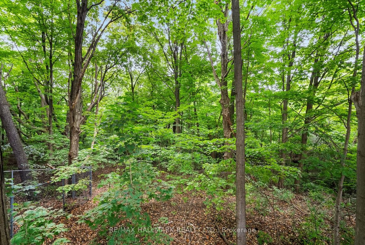 86 Bannatyne Drive 86 Bannatyne Drive Toronto C12