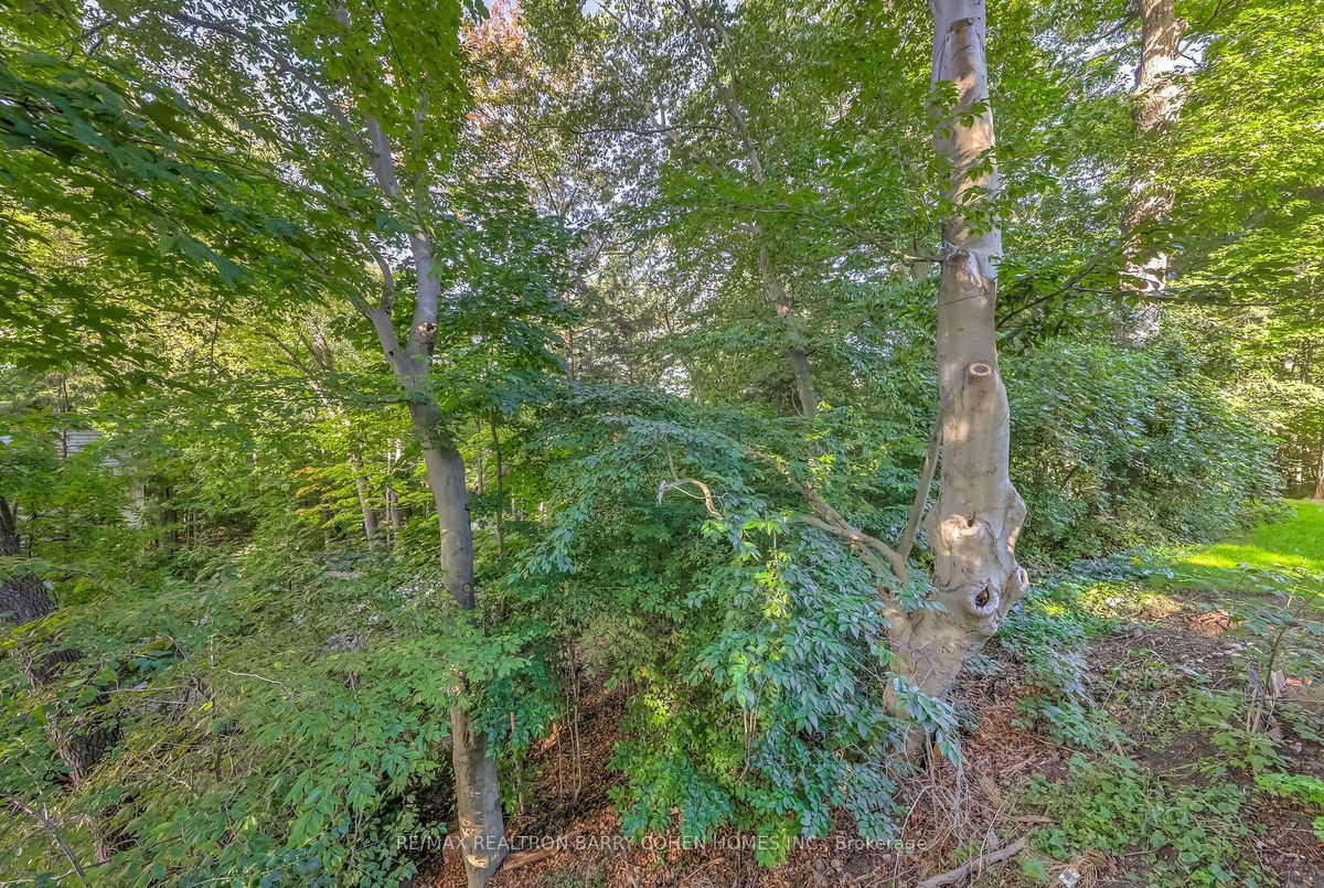 17 Artinger Court 17 Artinger Court Toronto C13