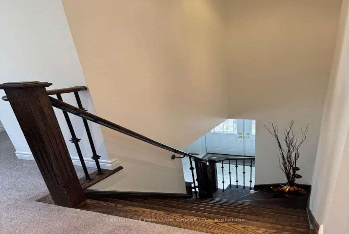 Main-135 Black Maple Crescent Main-135 Black Maple Crescent Vaughan