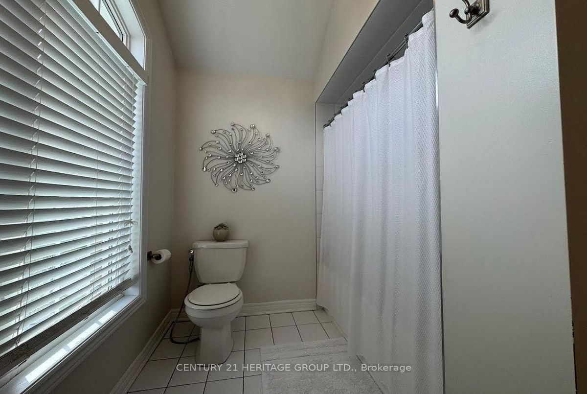 Main-135 Black Maple Crescent Main-135 Black Maple Crescent Vaughan