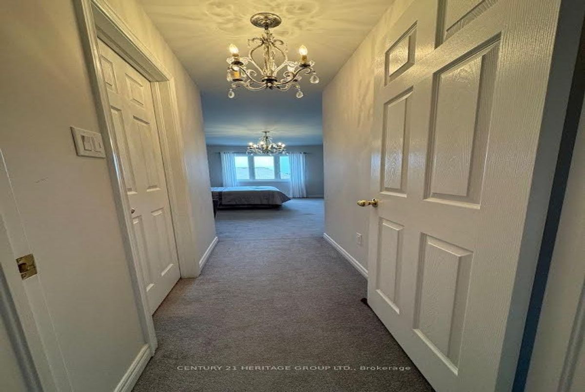 Main-135 Black Maple Crescent Main-135 Black Maple Crescent Vaughan