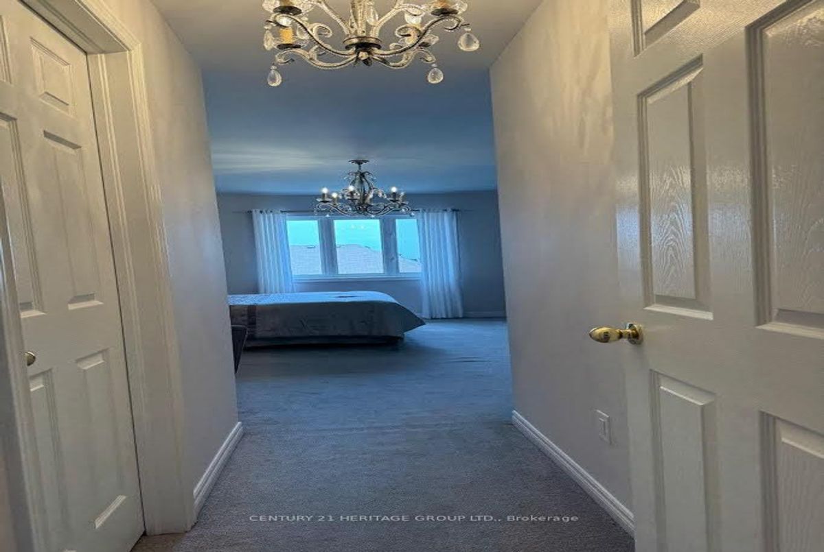 Main-135 Black Maple Crescent Main-135 Black Maple Crescent Vaughan