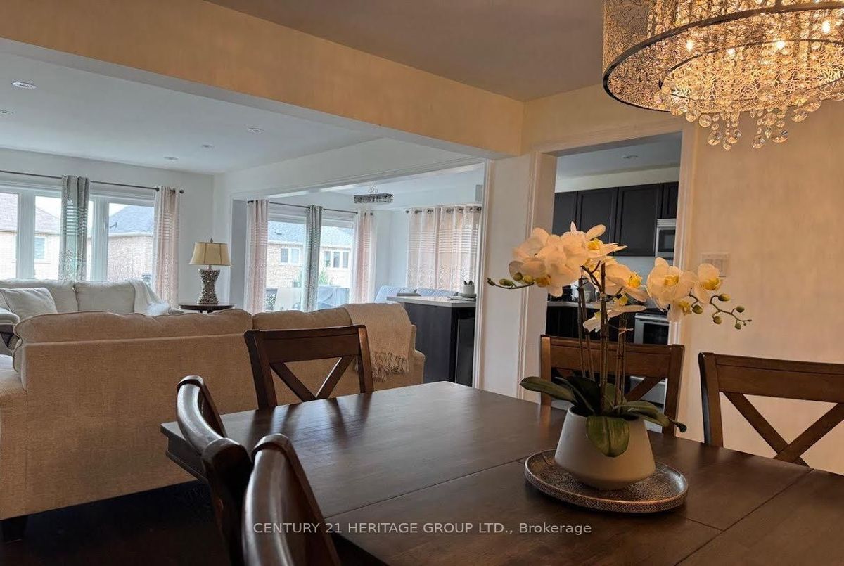 Main-135 Black Maple Crescent Main-135 Black Maple Crescent Vaughan