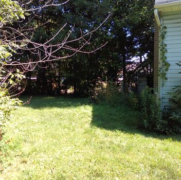 Residential Freehold 8 Richmond Street W New Tecumseth For {
  "AboveGradeFinishedArea": 0,
  "AboveGradeFinishedAreaSource": "",
  "AboveGradeFinishedAreaUnits": "",
  "Acreage": "",
  "Active": true,
  "Address": "8 Richmond Street W",
  "AirConditioning": "None",
  "AirConditioningYN": false,
  "Amps": "",
  "Appliances": "",
  "ApproxAge": "",
  "ApproxSquareFootage": "1500-2000",
  "Area": "Simcoe",
  "AssessmentYear": "",
  "AssignmentYN": false,
  "AssociationAmenities": "",
  "AssociationFee": "",
  "AssociationFeeIncludes": "",
  "AssociationName": "",
  "AssociationYN": false,
  "Balcony": "",
  "Basement": "Development Potential, Full",
  "BasementYN": false,
  "BathroomsFull": 0,
  "BathroomsHalf": 0,
  "Bedrooms": 0,
  "BedroomsDisplay": "0",
  "BedroomsPlus": 0,
  "BedroomsTotal": 0,
  "BelowGradeFinishedArea": 0,
  "BelowGradeFinishedAreaSource": "",
  "BelowGradeFinishedAreaUnits": "",
  "Board": "Toronto Regional Real Estate Board",
  "BuilderName": "",
  "BuildingAreaTotal": "",
  "BuildingAreaUnits": "",
  "BuildingName": "",
  "BusinessName": "",
  "BusinessType": "",
  "BuyerAgencyCompensation": "2.5%",
  "BuyerAgencyCompensationType": "",
  "BuyerAgentAOR": "",
  "BuyerAgentEmail": "",
  "BuyerAgentFullName": "",
  "BuyerAgentId": "",
  "BuyerAgentMlsId": "",
  "BuyerAgentPhone": "",
  "BuyerOfficeId": "",
  "BuyerOfficeMlsId": "",
  "BuyerOfficeName": "",
  "BuyerOfficePhone": "",
  "CarportSpaces": 0,
  "Category": "MLS",
  "ChattelsYN": false,
  "City": "New Tecumseth",
  "ClassSearch": "Residential",
  "CoListAgentDesignation": "",
  "CoListAgentEmail": "",
  "CoListAgentID": "9621066",
  "CoListAgentMLSID": "9621066",
  "CoListAgentName": "VALERIE HODGES-ROUTLEDGE, SRES, Salesperson",
  "CoListAgentPhone": "",
  "CoListOfficeID": "248515",
  "CoListOfficeMLSID": "248515",
  "CoListOfficeName": "CENTURY 21 HERITAGE GROUP LTD.",
  "CommercialCondoFee": "",
  "CommercialCondoFeeFrequency": "",
  "CommercialCondoFees": "",
  "Commission": "2.5%",
  "Community": "Tottenham",
  "CommunityFeatures": "",
  "Condition": "",
  "ConditionalExpiryDate": "2026-02-28T00:00:00",
  "ConditionOfSale": "",
  "CondoCorpNumber": "",
  "ConsentToAdvertiseYN": true,
  "ConstructionMaterials": "Aluminum Siding",
  "ContactAfterExpiryYN": false,
  "ContractDate": "2025-11-08T00:00:00",
  "Cooling": "None",
  "CoolingYN": false,
  "Country": "",
  "CoverPhoto": "https://media.remarketer.ca/PROPTX/N12525290-1.jpg?tr=di-propertynoimage_pj5ksb5iM,f-jpg,q-90",
  "CrossStreet": "Queen Street South, Richmond Street West",
  "DaysOnMarket": 44,
  "DepositRequired": "",
  "Directions": "Queen Street South to Richmond Street West",
  "Disclosures": "",
  "DisplayAddress": "8 Richmond Street W",
  "DisplayAddressYN": true,
  "DistributeToInternetYN": true,
  "Drive": "",
  "Electric": "Yes",
  "ElectricExpense": "",
  "ElectricOnPropertyYN": false,
  "ElectricYN": true,
  "ElementarySchool": "",
  "ElevatorYN": false,
  "Exclusions": "All Masonic regalia and props, fixtures belonging to the Tottenham Lodge No.467 G.R.C.",
  "Expenses": "",
  "ExpiryDate": "2026-03-19T00:00:00",
  "Exposure": "",
  "Exterior": "",
  "ExteriorFeatures": "",
  "Extras": "",
  "FamilyRoom": "",
  "FireplaceTotal": 0,
  "FireplaceYN": false,
  "Flooring": "",
  "FloorPlans": "",
  "FoundationDetails": "Block",
  "Franchise": "",
  "FranchiseYN": false,
  "FurnishedYN": false,
  "GarageSpaces": 0,
  "GarageType": "None",
  "GarageYN": false,
  "GasYN": true,
  "Geometry": {
    "lon": -79.806454,
    "lat": 44.021499
  },
  "GymYN": false,
  "HeatingYN": false,
  "HeatSource": "Gas",
  "HeatType": "Forced Air",
  "HighSchool": "",
  "HoldoverDays": "60",
  "id": "N12525290_PROPTX",
  "IDX": "Y",
  "IDXYN": true,
  "Inclusions": "Stove, Fridge, Hot Water Tank",
  "InteriorFeatures": "None",
  "Kitchens": 1,
  "KitchensPlus": 0,
  "LandLeaseAmount": "",
  "LandLeaseYN": false,
  "LastStatus": "Sc",
  "Latitude": 44.021499,
  "LaundryFeatures": "",
  "LaundryLevel": "",
  "Lease": "",
  "LeaseAgreement": "",
  "LeaseAgreementYN": false,
  "LeaseFrequency": "",
  "LeaseTerm": "",
  "LegalDescription": "",
  "Level": "",
  "ListAgentDesignation": "",
  "ListAgentEmail": "",
  "ListAgentID": "9569032",
  "ListAgentMLSID": "9569032",
  "ListAgentName": "KEN PRATT, Salesperson",
  "ListAgentPhone": "",
  "ListAOR": "Toronto Regional Real Estate Board",
  "ListBrokerage": "CENTURY 21 HERITAGE GROUP LTD.",
  "ListingEntryDate": "2025-11-08T15:08:27",
  "ListingId": "N12525290",
  "ListingKey": "N12525290",
  "ListOfficeID": "248515",
  "ListOfficeMLSID": "248515",
  "ListOfficePhone": "",
  "ListPrice": 599000,
  "ListPricePerUnit": 0,
  "ListPriceUnit": "",
  "LivingArea": "1500-2000",
  "LivingAreaSource": "",
  "LivingAreaUnits": "",
  "Locker": "",
  "Longitude": -79.806454,
  "LotDepth": 132,
  "LotFeatures": "",
  "LotFront": 66,
  "LotIrregularities": "",
  "LotShape": "Rectangular",
  "LotSizeArea": "",
  "LotSizeAreaUnits": "",
  "LotSizeCode": "Feet",
  "LotSizeDimensions": "",
  "Maintenance": "",
  "Media": [],
  "MediaChangeTimestamp": "2025-11-08T15:08:27",
  "MLS": "N12525290",
  "MLSLastStatus": "Sold Conditional",
  "MLSNumber": "N12525290",
  "MLSStatus": "Sold Conditional",
  "Municipality": "New Tecumseth",
  "MunicipalityDistrict": "New Tecumseth",
  "NewConstructionYN": false,
  "NumberOfBuildings": 0,
  "NumberOfUnitsTotal": 0,
  "OccupantType": "Vacant",
  "OpenHouses": [],
  "OpenHouseYN": false,
  "OriginalPrice": 599000,
  "OwnershipType": "",
  "ParcelNumber": "",
  "ParkingIncludedYN": false,
  "ParkingSpaces": 0,
  "PaymentFrequency": "",
  "PaymentMethod": "",
  "PetsPermitted": "",
  "PetsPermittedYN": false,
  "PhotoCount": 6,
  "PictureYN": false,
  "PoolFeatures": "None",
  "PoolYN": true,
  "PossessionDate": "2026-01-16",
  "PostalCode": "L0G 1W0",
  "PreviousListPrice": 0,
  "PriceChange": false,
  "PriorMlsStatus": "New",
  "PrivateEntrance": "",
  "PrivateEntranceYN": false,
  "PrivateRemarks": "The Building is being sold as is, and the Trustees do not warranty the usage or chattels and fixtures. Buyers to do their only due diligence. Due to the sensitivity of the nature of the Lodge Regalia, Buyers can inspect the property from outside but the listing agent must be present for any serious buyers to view the interior of the building. No exceptions.",
  "PropertyAttachedYN": false,
  "PropertyCondition": "",
  "PropertyFeatures": "Greenbelt/Conservation, Lake/Pond, Level, Place Of Worship, Rec./Commun.Centre, School",
  "PropertyManagementCompany": "",
  "PropertyStyleSearch": "Other",
  "PropertySubType": "Detached",
  "PropertySubTypeSearch": "Single Family",
  "PropertyType": "Residential Freehold",
  "PropertyTypeSearch": "Residential",
  "Province": "ON",
  "PublicRemarks": "Exciting Redevelopment Opportunity in the Village of Tottenham! Discover the potential of this unique property-a raised bungalow-style meeting hall tucked away on a quiet dead-end road, right beside the TransCanada Trail and the Tottenham Conservation Area. Enjoy the perfect blend of privacy and convenience, with a large, wide-frontage lot located in a residential area that directly borders Tottenham's charming downtown core. Originally built over 70 years ago as an A.F. & A.M. Masonic Lodge, the building includes a main gathering hall and a basement with a washroom and additional meeting space. With the Ontario Government's focus on community intensification, this Low Rise Residential-zoned property offers excellent redevelopment possibilities. The site is fully serviced with municipal water, sewers, and natural gas-making it an ideal spot for your next building project.",
  "RemarksForClients": "Exciting Redevelopment Opportunity in the Village of Tottenham! Discover the potential of this unique property-a raised bungalow-style meeting hall tucked away on a quiet dead-end road, right beside the TransCanada Trail and the Tottenham Conservation Area. Enjoy the perfect blend of privacy and convenience, with a large, wide-frontage lot located in a residential area that directly borders Tottenham's charming downtown core. Originally built over 70 years ago as an A.F. & A.M. Masonic Lodge, the building includes a main gathering hall and a basement with a washroom and additional meeting space. With the Ontario Government's focus on community intensification, this Low Rise Residential-zoned property offers excellent redevelopment possibilities. The site is fully serviced with municipal water, sewers, and natural gas-making it an ideal spot for your next building project.",
  "Restricted": false,
  "RetirementYN": false,
  "RoadFrontageType": "",
  "RoadSurfaceType": "",
  "RollNumber": "",
  "Roof": "Asphalt Shingle",
  "Rooms": [],
  "RoomsAboveGrade": 2,
  "RoomsBelowGrade": 3,
  "RoomsTotal": 0,
  "RoomsYN": false,
  "RTimestampSql": "2026-03-01T20:13:27.14",
  "SaleLease": "Sale",
  "SalesBrochure": "",
  "Sauna": "",
  "SaunaYN": false,
  "Sewers": "Sewer",
  "ShowingInstruction": "See Brokerage Remarks, Showing System, List Brokerage, List Salesperson",
  "SignOnPropertyYN": false,
  "Sold": false,
  "SoldPrice": 0,
  "Source": "PROPTX",
  "SourceSystemID": "A00001796",
  "SpaFeatures": "",
  "SpaYN": false,
  "SPLP": 100,
  "SqFtRangeMax": 2000,
  "SqFtRangeMin": 1500,
  "SqFtTotal": 0,
  "StandardStatus": "Pending",
  "Status": "A",
  "Stories": "",
  "StoriesTotal": "",
  "StreetAbbreviation": "",
  "StreetDirection": "W",
  "StreetName": "Richmond",
  "StreetNumber": "8",
  "StreetSuffix": "Street",
  "StreetSuffixCode": "",
  "StructureType": "",
  "Style": "Other",
  "SubLeaseYN": false,
  "Summary": "listingkey:N12525290 | mls_number:N12525290 | address:8 Richmond Street W, New Tecumseth, ON L0G 1W0 | community:Tottenham | property_type:Residential Freehold | property_subtype:Detached | building_type:Detached | building_style:Other | list_price:599000 | list_date:11/8/2025 3:08:27 PM | sold_price:0 | bed:0 | bath:1 | active:True | sold:False | source:PROPTX | transaction:Sale | listing_office:CENTURY 21 HERITAGE GROUP LTD. | thumbnail:https://media.remarketer.ca/PROPTX/N12525290-1.jpg?tr=di-propertynoimage_pj5ksb5iM,f-jpg,w-600,h-600,q-90,c-maintain_ratio,fo-center",
  "SurveyType": "Unknown",
  "SurveyYear": "",
  "SurveyYN": false,
  "TaxAssessedValue": "328000",
  "Taxes": 3542.49,
  "TaxLegalDescription": "LT 9 N/S RICHMOND ST PL 281 ; NEW TECUMSETH",
  "TaxYear": "2025",
  "TenantPays": "",
  "Thumbnail": "https://media.remarketer.ca/PROPTX/N12525290-1.jpg?tr=di-propertynoimage_pj5ksb5iM,f-jpg,w-600,h-600,q-90,c-maintain_ratio,fo-center",
  "TimeShareYN": false,
  "TimestampSql": "2026-01-22T19:40:39",
  "TMI": "",
  "TotalArea": "",
  "TotalAreaUnit": "",
  "TotalParkingSpaces": 0,
  "Type": "Detached",
  "TypeSearch": "Detached",
  "UFFI": "No",
  "UnitNumber": "",
  "Units": "",
  "UnparsedAddress": "8 Richmond Street W, New Tecumseth, ON L0G 1W0",
  "Use": "",
  "Utilities": "",
  "UtilityExpenses": "",
  "View": "",
  "VirtualTour3DURL": "",
  "VirtualTourURL": "http://www.8Richmond.com/",
  "VirtualTourURLUnbranded": "http://www.8Richmond.com/unbranded",
  "Volts": "",
  "Warranty": "",
  "WarrantyYN": false,
  "Washrooms": 1,
  "Water": "Municipal",
  "WaterBodyName": "",
  "WaterBodyType": "",
  "WaterExpense": "",
  "Waterfront": "",
  "WaterFrontage": "",
  "WaterFrontageFt": "",
  "WaterfrontYN": false,
  "WaterIncluded": "",
  "WaterSupplyTypes": "Municipal",
  "WaterView": "",
  "WaterYN": true,
  "WellCapacity": "",
  "WellCapacityUnits": "",
  "WellDepth": "",
  "WellDepthUnits": "",
  "Winterized": "",
  "YearBuilt": "",
  "Zoning": "Low Rise Residential"
}.(string)property[