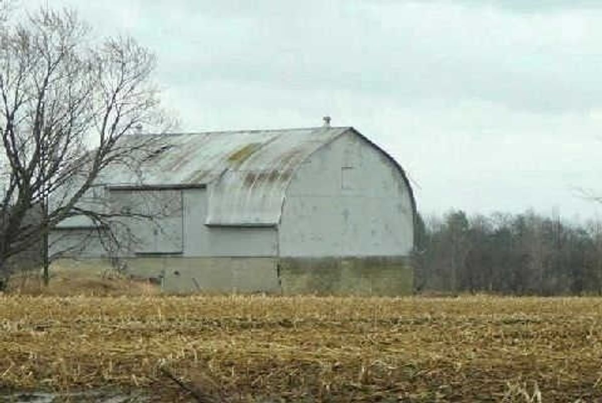 img-gallery
