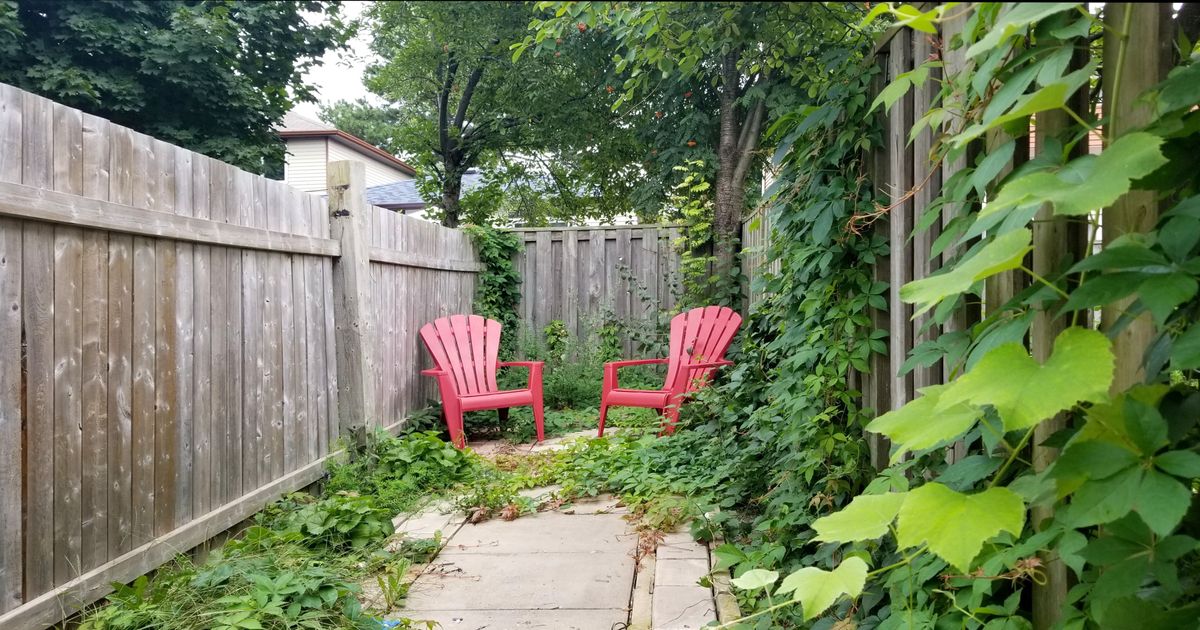 Bsmt-29 Madsen Crescent Markham
