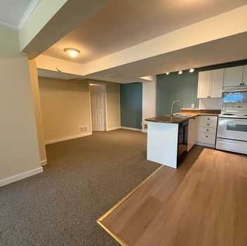 Residential Freehold 927 Srigley Street Newmarket For {
  "AboveGradeFinishedArea": 0,
  "AboveGradeFinishedAreaSource": "",
  "AboveGradeFinishedAreaUnits": "",
  "Acreage": "",
  "Active": false,
  "Address": "927 Srigley Street",
  "AirConditioning": "Central Air",
  "AirConditioningYN": false,
  "Amps": "",
  "Appliances": "",
  "ApproxAge": "",
  "ApproxSquareFootage": "700-1100",
  "Area": "York",
  "AssessmentYear": "",
  "AssignmentYN": false,
  "AssociationAmenities": "",
  "AssociationFee": "",
  "AssociationFeeIncludes": "",
  "AssociationName": "",
  "AssociationYN": false,
  "Balcony": "",
  "Basement": "Finished with Walk-Out",
  "BasementYN": false,
  "BathroomsFull": 0,
  "BathroomsHalf": 0,
  "Bedrooms": 2,
  "BedroomsDisplay": "2+1",
  "BedroomsPlus": 1,
  "BedroomsTotal": 3,
  "BelowGradeFinishedArea": 0,
  "BelowGradeFinishedAreaSource": "",
  "BelowGradeFinishedAreaUnits": "",
  "Board": "Toronto Regional Real Estate Board",
  "BuilderName": "",
  "BuildingAreaTotal": "",
  "BuildingAreaUnits": "",
  "BuildingName": "",
  "BusinessName": "",
  "BusinessType": "",
  "BuyerAgencyCompensation": "1/2 Month + HST",
  "BuyerAgencyCompensationType": "",
  "BuyerAgentAOR": "",
  "BuyerAgentEmail": "",
  "BuyerAgentFullName": "",
  "BuyerAgentId": "",
  "BuyerAgentMlsId": "",
  "BuyerAgentPhone": "",
  "BuyerOfficeId": "",
  "BuyerOfficeMlsId": "",
  "BuyerOfficeName": "",
  "BuyerOfficePhone": "",
  "CarportSpaces": 0,
  "Category": "MLS",
  "ChattelsYN": false,
  "City": "Newmarket",
  "ClassSearch": "Residential",
  "ClosedDate": "2026-06-15T00:00:00",
  "CoListAgentDesignation": "",
  "CoListAgentEmail": "",
  "CoListAgentID": "",
  "CoListAgentMLSID": "",
  "CoListAgentName": "",
  "CoListAgentPhone": "",
  "CoListOfficeID": "248500",
  "CoListOfficeMLSID": "248500",
  "CoListOfficeName": "CENTURY 21 HERITAGE GROUP LTD.",
  "CommercialCondoFee": "",
  "CommercialCondoFeeFrequency": "",
  "CommercialCondoFees": "",
  "Commission": "1/2 Month + HST",
  "Community": "Gorham-College Manor",
  "CommunityFeatures": "",
  "Condition": "",
  "ConditionalExpiryDate": "0001-01-01T00:00:00",
  "ConditionOfSale": "",
  "CondoCorpNumber": "",
  "ConsentToAdvertiseYN": true,
  "ConstructionMaterials": "Brick",
  "ContactAfterExpiryYN": false,
  "ContractDate": "2026-05-29T00:00:00",
  "Cooling": "Central Air",
  "CoolingYN": false,
  "Country": "",
  "CoverPhoto": "https://media.remarketer.ca/PROPTX/N13213736-1.jpg?tr=di-propertynoimage_pj5ksb5iM,f-jpg,q-90",
  "CrossStreet": "Srigley & Carlson",
  "DaysOnMarket": 16,
  "DepositRequired": "True",
  "Directions": "Srigley & Carlson",
  "Disclosures": "",
  "DisplayAddress": "Bsmt-927 Srigley Street",
  "DisplayAddressYN": true,
  "DistributeToInternetYN": true,
  "Drive": "",
  "Electric": "",
  "ElectricExpense": "",
  "ElectricOnPropertyYN": false,
  "ElectricYN": false,
  "ElementarySchool": "",
  "ElevatorYN": false,
  "Exclusions": "",
  "Expenses": "",
  "ExpiryDate": "2026-09-30T00:00:00",
  "Exposure": "",
  "Exterior": "",
  "ExteriorFeatures": "",
  "Extras": "",
  "FamilyRoom": "",
  "FireplaceTotal": 0,
  "FireplaceYN": true,
  "Flooring": "",
  "FloorPlans": "",
  "FoundationDetails": "Concrete",
  "Franchise": "",
  "FranchiseYN": false,
  "FurnishedYN": false,
  "GarageSpaces": 0,
  "GarageType": "None",
  "GarageYN": false,
  "GasYN": false,
  "Geometry": {
    "lat": 44.0591,
    "lon": -79.4372
  },
  "GymYN": false,
  "HeatingYN": false,
  "HeatSource": "Gas",
  "HeatType": "Forced Air",
  "HighSchool": "",
  "HoldoverDays": "120",
  "id": "N13213736_PROPTX",
  "IDX": "Y",
  "IDXYN": true,
  "Inclusions": "",
  "InteriorFeatures": "None",
  "Kitchens": 1,
  "KitchensPlus": 0,
  "LandLeaseAmount": "",
  "LandLeaseYN": false,
  "LastStatus": "Lsd",
  "Latitude": 44.0591,
  "LaundryFeatures": "Ensuite",
  "LaundryLevel": "",
  "Lease": "",
  "LeaseAgreement": "12 Months",
  "LeaseAgreementYN": true,
  "LeaseFrequency": "",
  "LeaseTerm": "12 Months",
  "LegalDescription": "",
  "Level": "",
  "ListAgentDesignation": "",
  "ListAgentEmail": "",
  "ListAgentID": "9563546",
  "ListAgentMLSID": "9563546",
  "ListAgentName": "NONA AKHAVAN, Salesperson",
  "ListAgentPhone": "",
  "ListAOR": "Toronto Regional Real Estate Board",
  "ListBrokerage": "CENTURY 21 HERITAGE GROUP LTD.",
  "ListingEntryDate": "2026-05-29T14:48:04",
  "ListingId": "N13213736",
  "ListingKey": "N13213736",
  "ListOfficeID": "248500",
  "ListOfficeMLSID": "248500",
  "ListOfficePhone": "",
  "ListPrice": 2150,
  "ListPricePerUnit": 0,
  "ListPriceUnit": "",
  "LivingArea": "700-1100",
  "LivingAreaSource": "",
  "LivingAreaUnits": "",
  "Locker": "",
  "Longitude": -79.4372,
  "LotDepth": 0,
  "LotFeatures": "",
  "LotFront": 0,
  "LotIrregularities": "",
  "LotShape": "",
  "LotSizeArea": "",
  "LotSizeAreaUnits": "",
  "LotSizeCode": "",
  "LotSizeDimensions": "",
  "Maintenance": "",
  "Media": [
    {
      "id": "6e97e562-b49f-4cbe-8624-a9124382c02f-nw_PROPTX",
      "ListingId": "N13213736",
      "ListingKey": "N13213736",
      "MediaId": "6e97e562-b49f-4cbe-8624-a9124382c02f-nw",
      "ModificationTimestamp": "2026-05-29T14:48:04",
      "MediaOrder": 1,
      "Active": true,
      "MediaSize": "",
      "ResourceName": "Property",
      "ClassName": "ResidentialFree",
      "MediaDescription": "",
      "PreferredPhotoYN": true,
      "WaterMarkYN": false,
      "MediaName": "",
      "MediaCategory": "Photo",
      "MediaHTML": "",
      "MediaType": "image/jpeg",
      "MediaUrl": "https://trreb-image.ampre.ca/6c15rdxUTZ-KdXD78qcWlhbjm9gp4h93jP82_jAMPGQ/rs:fit:3840:3840/L3RycmViL2xpc3RpbmdzLzQzLzY5LzYzLzc1L3AvNmU5N2U1NjItYjQ5Zi00Y2JlLTg2MjQtYTkxMjQzODJjMDJmLmpwZw.jpg",
      "MediaWidth": "1215",
      "MediaHeight": "911",
      "MediaStatus": "Active",
      "Source": "PROPTX",
      "OriginatingSystemName": "",
      "RTimestampSql": "2026-05-29T15:05:16.23"
    },
    {
      "id": "769c8b0b-d324-41e4-afe0-e40453090e97-nw_PROPTX",
      "ListingId": "N13213736",
      "ListingKey": "N13213736",
      "MediaId": "769c8b0b-d324-41e4-afe0-e40453090e97-nw",
      "ModificationTimestamp": "2026-05-29T14:48:04",
      "MediaOrder": 2,
      "Active": true,
      "MediaSize": "",
      "ResourceName": "Property",
      "ClassName": "ResidentialFree",
      "MediaDescription": "",
      "PreferredPhotoYN": false,
      "WaterMarkYN": false,
      "MediaName": "",
      "MediaCategory": "Photo",
      "MediaHTML": "",
      "MediaType": "image/jpeg",
      "MediaUrl": "https://trreb-image.ampre.ca/0Gsj4tYZnyzgH0CpJR50NB8W42IZf1Z8px_QYdcVcoo/rs:fit:3840:3840/L3RycmViL2xpc3RpbmdzLzQzLzY5LzYzLzc1L3AvNzY5YzhiMGItZDMyNC00MWU0LWFmZTAtZTQwNDUzMDkwZTk3LmpwZw.jpg",
      "MediaWidth": "1215",
      "MediaHeight": "911",
      "MediaStatus": "Active",
      "Source": "PROPTX",
      "OriginatingSystemName": "",
      "RTimestampSql": "2026-05-29T15:05:16.32"
    },
    {
      "id": "bded83d3-1b9e-4fb9-87b2-0dd0f88c1310-nw_PROPTX",
      "ListingId": "N13213736",
      "ListingKey": "N13213736",
      "MediaId": "bded83d3-1b9e-4fb9-87b2-0dd0f88c1310-nw",
      "ModificationTimestamp": "2026-05-29T14:48:04",
      "MediaOrder": 3,
      "Active": true,
      "MediaSize": "",
      "ResourceName": "Property",
      "ClassName": "ResidentialFree",
      "MediaDescription": "",
      "PreferredPhotoYN": false,
      "WaterMarkYN": false,
      "MediaName": "",
      "MediaCategory": "Photo",
      "MediaHTML": "",
      "MediaType": "image/jpeg",
      "MediaUrl": "https://trreb-image.ampre.ca/9vUe03DmwDrxh3jYXN9o8ojysMCjJzomfaBHyjRGPqs/rs:fit:3840:3840/L3RycmViL2xpc3RpbmdzLzQzLzY5LzYzLzc1L3AvYmRlZDgzZDMtMWI5ZS00ZmI5LTg3YjItMGRkMGY4OGMxMzEwLmpwZw.jpg",
      "MediaWidth": "1215",
      "MediaHeight": "911",
      "MediaStatus": "Active",
      "Source": "PROPTX",
      "OriginatingSystemName": "",
      "RTimestampSql": "2026-05-29T15:05:16.247"
    },
    {
      "id": "ef0f3f80-3003-489c-8ee6-2849c4569051-nw_PROPTX",
      "ListingId": "N13213736",
      "ListingKey": "N13213736",
      "MediaId": "ef0f3f80-3003-489c-8ee6-2849c4569051-nw",
      "ModificationTimestamp": "2026-05-29T14:48:04",
      "MediaOrder": 4,
      "Active": true,
      "MediaSize": "",
      "ResourceName": "Property",
      "ClassName": "ResidentialFree",
      "MediaDescription": "",
      "PreferredPhotoYN": false,
      "WaterMarkYN": false,
      "MediaName": "",
      "MediaCategory": "Photo",
      "MediaHTML": "",
      "MediaType": "image/jpeg",
      "MediaUrl": "https://trreb-image.ampre.ca/bYbRx3RAHfbeRblmNRTE7GefpIotKLp5xhrj2AqVGsE/rs:fit:3840:3840/L3RycmViL2xpc3RpbmdzLzQzLzY5LzYzLzc1L3AvZWYwZjNmODAtMzAwMy00ODljLThlZTYtMjg0OWM0NTY5MDUxLmpwZw.jpg",
      "MediaWidth": "1215",
      "MediaHeight": "911",
      "MediaStatus": "Active",
      "Source": "PROPTX",
      "OriginatingSystemName": "",
      "RTimestampSql": "2026-05-29T15:05:16.263"
    },
    {
      "id": "227a4c8d-b8e2-4816-a2ae-89ad5014bc5d-nw_PROPTX",
      "ListingId": "N13213736",
      "ListingKey": "N13213736",
      "MediaId": "227a4c8d-b8e2-4816-a2ae-89ad5014bc5d-nw",
      "ModificationTimestamp": "2026-05-29T14:48:04",
      "MediaOrder": 5,
      "Active": true,
      "MediaSize": "",
      "ResourceName": "Property",
      "ClassName": "ResidentialFree",
      "MediaDescription": "",
      "PreferredPhotoYN": false,
      "WaterMarkYN": false,
      "MediaName": "",
      "MediaCategory": "Photo",
      "MediaHTML": "",
      "MediaType": "image/jpeg",
      "MediaUrl": "https://trreb-image.ampre.ca/2CdWAZwAlK2ooWqv1-f3tD3Tk10j8nbZeDqol-8oXJE/rs:fit:3840:3840/L3RycmViL2xpc3RpbmdzLzQzLzY5LzYzLzc1L3AvMjI3YTRjOGQtYjhlMi00ODE2LWEyYWUtODlhZDUwMTRiYzVkLmpwZw.jpg",
      "MediaWidth": "1215",
      "MediaHeight": "911",
      "MediaStatus": "Active",
      "Source": "PROPTX",
      "OriginatingSystemName": "",
      "RTimestampSql": "2026-05-29T15:05:16.28"
    },
    {
      "id": "c07aff75-bace-445a-8eed-3f43dc10a939-nw_PROPTX",
      "ListingId": "N13213736",
      "ListingKey": "N13213736",
      "MediaId": "c07aff75-bace-445a-8eed-3f43dc10a939-nw",
      "ModificationTimestamp": "2026-05-29T14:48:04",
      "MediaOrder": 6,
      "Active": true,
      "MediaSize": "",
      "ResourceName": "Property",
      "ClassName": "ResidentialFree",
      "MediaDescription": "",
      "PreferredPhotoYN": false,
      "WaterMarkYN": false,
      "MediaName": "",
      "MediaCategory": "Photo",
      "MediaHTML": "",
      "MediaType": "image/jpeg",
      "MediaUrl": "https://trreb-image.ampre.ca/GD4SpI95LbxZcW0nlP5M9pLjkutpjAThMUTmMeUt9UU/rs:fit:3840:3840/L3RycmViL2xpc3RpbmdzLzQzLzY5LzYzLzc1L3AvYzA3YWZmNzUtYmFjZS00NDVhLThlZWQtM2Y0M2RjMTBhOTM5LmpwZw.jpg",
      "MediaWidth": "1215",
      "MediaHeight": "911",
      "MediaStatus": "Active",
      "Source": "PROPTX",
      "OriginatingSystemName": "",
      "RTimestampSql": "2026-05-29T15:05:16.297"
    }
  ],
  "MediaChangeTimestamp": "2026-05-29T14:48:04",
  "MLS": "N13213736",
  "MLSLastStatus": "Leased",
  "MLSNumber": "N13213736",
  "MLSStatus": "Leased",
  "Municipality": "Newmarket",
  "MunicipalityDistrict": "Newmarket",
  "NewConstructionYN": false,
  "NumberOfBuildings": 0,
  "NumberOfUnitsTotal": 0,
  "OccupantType": "Vacant",
  "OpenHouses": [],
  "OpenHouseYN": false,
  "OriginalPrice": 2150,
  "OwnershipType": "",
  "ParcelNumber": "036150266",
  "ParkingIncludedYN": false,
  "ParkingSpaces": 2,
  "PaymentFrequency": "",
  "PaymentMethod": "",
  "PetsPermitted": "",
  "PetsPermittedYN": false,
  "PhotoCount": 6,
  "PictureYN": false,
  "PoolFeatures": "None",
  "PoolYN": true,
  "PossessionDate": "",
  "PostalCode": "L3Y 1Y2",
  "PreviousListPrice": 0,
  "PriceChange": false,
  "PriceChangeTimestamp": "0001-01-01T00:00:00",
  "PriorMlsStatus": "New",
  "PrivateEntrance": "",
  "PrivateEntranceYN": true,
  "PrivateRemarks": "A.A.A Corporate Tenants Only!*** Rental Application, Full Credit Report & Score, Employment Letter With Proper Verification, References, Photo I.D. 1 Hour Notice For All Showings. Proof Of Income, Thank You For Showing.",
  "PropertyAttachedYN": false,
  "PropertyCondition": "",
  "PropertyFeatures": "",
  "PropertyManagementCompany": "",
  "PropertyStyleSearch": "Bungalow",
  "PropertySubType": "Detached",
  "PropertySubTypeSearch": "Single Family",
  "PropertyType": "Residential Freehold",
  "PropertyTypeSearch": "Residential",
  "Province": "ON",
  "PurchaseContractDate": "2026-06-14T00:00:00",
  "RemarksForClients": "Spacious and well-maintained walk-out basement featuring 2 bedrooms plus a den, ensuite laundry, offering a functional and family-friendly layout. Bright and inviting with large windows and abundant natural light. Situated on a desirable corner property, providing added privacy and openness. Enjoy a generously sized backyard, perfect for relaxing or outdoor activities. Located in the sought-after Gorham-College area, Manor is known for its family-friendly environment, great schools, parks, and amenities. The home is ideal for comfortable living. The unit is just Cat Friendly.",
  "Restricted": true,
  "RetirementYN": false,
  "RoadFrontageType": "",
  "RoadSurfaceType": "",
  "RollNumber": "194801004030600",
  "Roof": "Shingles",
  "Rooms": [
    {
      "id": "297bc216-8902-48de-b957-9cdc407a9466_PROPTX",
      "ListingId": "N13213736",
      "ListingKey": "N13213736",
      "RoomId": "297bc216-8902-48de-b957-9cdc407a9466",
      "ModificationTimestamp": "2026-05-29T14:48:04",
      "RoomOrder": 0,
      "RoomArea": "",
      "RoomAreaUnits": "",
      "RoomDescription": "",
      "RoomDimensions": "",
      "RoomFeatures": "Broadloom Overlooks Backyard",
      "RoomKeyNumeric": "",
      "RoomLength": "5.77",
      "RoomLengthWidthUnits": "",
      "RoomLevel": "Basement",
      "RoomType": "Living Room",
      "RoomWidth": "3.96",
      "RoomStatus": "Active",
      "Source": "PROPTX",
      "OriginatingSystemName": "PROPTX",
      "RTimestampSql": "2026-05-29T15:05:09.387"
    },
    {
      "id": "d1d4c4ac-41f2-4ffc-990b-490232ad73fe_PROPTX",
      "ListingId": "N13213736",
      "ListingKey": "N13213736",
      "RoomId": "d1d4c4ac-41f2-4ffc-990b-490232ad73fe",
      "ModificationTimestamp": "2026-05-29T14:48:04",
      "RoomOrder": 1,
      "RoomArea": "",
      "RoomAreaUnits": "",
      "RoomDescription": "",
      "RoomDimensions": "",
      "RoomFeatures": "Broadloom Open Concept",
      "RoomKeyNumeric": "",
      "RoomLength": "1.5",
      "RoomLengthWidthUnits": "",
      "RoomLevel": "Basement",
      "RoomType": "Dining Room",
      "RoomWidth": "3.33",
      "RoomStatus": "Active",
      "Source": "PROPTX",
      "OriginatingSystemName": "PROPTX",
      "RTimestampSql": "2026-05-29T15:05:09.417"
    },
    {
      "id": "c011b61c-4c02-409b-96ea-50c6427aaea4_PROPTX",
      "ListingId": "N13213736",
      "ListingKey": "N13213736",
      "RoomId": "c011b61c-4c02-409b-96ea-50c6427aaea4",
      "ModificationTimestamp": "2026-05-29T14:48:04",
      "RoomOrder": 2,
      "RoomArea": "",
      "RoomAreaUnits": "",
      "RoomDescription": "",
      "RoomDimensions": "",
      "RoomFeatures": "Stainless Steel Appl Laminate",
      "RoomKeyNumeric": "",
      "RoomLength": "3.91",
      "RoomLengthWidthUnits": "",
      "RoomLevel": "Basement",
      "RoomType": "Kitchen",
      "RoomWidth": "2.29",
      "RoomStatus": "Active",
      "Source": "PROPTX",
      "OriginatingSystemName": "PROPTX",
      "RTimestampSql": "2026-05-29T15:05:09.433"
    },
    {
      "id": "306e6464-3365-4120-b75b-a21d38db203b_PROPTX",
      "ListingId": "N13213736",
      "ListingKey": "N13213736",
      "RoomId": "306e6464-3365-4120-b75b-a21d38db203b",
      "ModificationTimestamp": "2026-05-29T14:48:04",
      "RoomOrder": 3,
      "RoomArea": "",
      "RoomAreaUnits": "",
      "RoomDescription": "",
      "RoomDimensions": "",
      "RoomFeatures": "Closet Broadloom",
      "RoomKeyNumeric": "",
      "RoomLength": "2.62",
      "RoomLengthWidthUnits": "",
      "RoomLevel": "Basement",
      "RoomType": "Primary Bedroom",
      "RoomWidth": "3.96",
      "RoomStatus": "Active",
      "Source": "PROPTX",
      "OriginatingSystemName": "PROPTX",
      "RTimestampSql": "2026-05-29T15:05:09.46"
    },
    {
      "id": "fb7fa320-051c-4f26-8b23-08de3aedc4b5_PROPTX",
      "ListingId": "N13213736",
      "ListingKey": "N13213736",
      "RoomId": "fb7fa320-051c-4f26-8b23-08de3aedc4b5",
      "ModificationTimestamp": "2026-05-29T14:48:04",
      "RoomOrder": 4,
      "RoomArea": "",
      "RoomAreaUnits": "",
      "RoomDescription": "",
      "RoomDimensions": "",
      "RoomFeatures": "Closet Broadloom",
      "RoomKeyNumeric": "",
      "RoomLength": "3.94",
      "RoomLengthWidthUnits": "",
      "RoomLevel": "Basement",
      "RoomType": "Bedroom 2",
      "RoomWidth": "3.81",
      "RoomStatus": "Active",
      "Source": "PROPTX",
      "OriginatingSystemName": "PROPTX",
      "RTimestampSql": "2026-05-29T15:05:09.48"
    },
    {
      "id": "f17e8625-b9cd-4350-90de-81ddf53bad6f_PROPTX",
      "ListingId": "N13213736",
      "ListingKey": "N13213736",
      "RoomId": "f17e8625-b9cd-4350-90de-81ddf53bad6f",
      "ModificationTimestamp": "2026-05-29T14:48:04",
      "RoomOrder": 5,
      "RoomArea": "",
      "RoomAreaUnits": "",
      "RoomDescription": "",
      "RoomDimensions": "",
      "RoomFeatures": "Closet Broadloom",
      "RoomKeyNumeric": "",
      "RoomLength": "2.74",
      "RoomLengthWidthUnits": "",
      "RoomLevel": "Basement",
      "RoomType": "Den",
      "RoomWidth": "3.96",
      "RoomStatus": "Active",
      "Source": "PROPTX",
      "OriginatingSystemName": "PROPTX",
      "RTimestampSql": "2026-05-29T15:05:09.507"
    }
  ],
  "RoomsAboveGrade": 4,
  "RoomsBelowGrade": 0,
  "RoomsTotal": 0,
  "RoomsYN": false,
  "RTimestampSql": "2026-06-29T21:05:55.313",
  "SaleLease": "Lease",
  "SalesBrochure": "",
  "Sauna": "",
  "SaunaYN": false,
  "Sewers": "Sewer",
  "ShowingInstruction": "Lockbox",
  "SignOnPropertyYN": true,
  "Sold": true,
  "SoldDate": "2026-06-14T00:00:00",
  "SoldPrice": 2100,
  "Source": "PROPTX",
  "SourceSystemID": "A00001796",
  "SpaFeatures": "",
  "SpaYN": false,
  "SPLP": 98,
  "SqFtRangeMax": 1100,
  "SqFtRangeMin": 700,
  "SqFtTotal": 0,
  "StandardStatus": "Closed",
  "Status": "U",
  "Stories": "",
  "StoriesTotal": "",
  "StreetAbbreviation": "",
  "StreetDirection": "",
  "StreetName": "Srigley",
  "StreetNumber": "927",
  "StreetSuffix": "Street",
  "StreetSuffixCode": "",
  "StructureType": "",
  "Style": "Bungalow",
  "SubLeaseYN": false,
  "Summary": "listingkey:N13213736 | mls_number:N13213736 | address:927 Srigley Street Bsmt, Newmarket, ON L3Y 1Y2 | community:Gorham-College Manor | property_type:Residential Freehold | property_subtype:Detached | building_type:Detached | building_style:Bungalow | list_price:2150 | list_date:5/29/2026 2:48:04 PM | sold_price:2100 | sold_date:6/14/2026 12:00:00 AM | bed:2+1 | bath:1 | active:False | sold:True | source:PROPTX | transaction:Lease | listing_office:CENTURY 21 HERITAGE GROUP LTD. | thumbnail:https://media.remarketer.ca/PROPTX/N13213736-1.jpg?tr=di-propertynoimage_pj5ksb5iM,f-jpg,w-600,h-600,q-90,c-maintain_ratio,fo-center",
  "SurveyType": "None",
  "SurveyYear": "",
  "SurveyYN": false,
  "SuspendedDate": "0001-01-01T00:00:00",
  "TaxAssessedValue": "",
  "Taxes": 0,
  "TaxLegalDescription": "",
  "TaxYear": "",
  "TenantPays": "",
  "TerminatedDate": "0001-01-01T00:00:00",
  "Thumbnail": "https://media.remarketer.ca/PROPTX/N13213736-1.jpg?tr=di-propertynoimage_pj5ksb5iM,f-jpg,w-600,h-600,q-90,c-maintain_ratio,fo-center",
  "TimeShareYN": false,
  "TimestampSql": "2026-06-29T20:53:10",
  "TMI": "",
  "TotalArea": "",
  "TotalAreaUnit": "",
  "TotalParkingSpaces": 2,
  "Type": "Detached",
  "TypeSearch": "Detached",
  "UFFI": "",
  "UnitNumber": "Bsmt",
  "Units": "",
  "UnparsedAddress": "927 Srigley Street Bsmt, Newmarket, ON L3Y 1Y2",
  "Use": "",
  "Utilities": "",
  "UtilityExpenses": "",
  "View": "",
  "VirtualTour3DURL": "",
  "VirtualTourURL": "",
  "VirtualTourURLUnbranded": "",
  "Volts": "",
  "Warranty": "",
  "WarrantyYN": false,
  "Washrooms": 1,
  "Water": "Municipal",
  "WaterBodyName": "",
  "WaterBodyType": "Lake",
  "WaterExpense": "",
  "Waterfront": "",
  "WaterFrontage": "",
  "WaterFrontageFt": "",
  "WaterfrontYN": false,
  "WaterIncluded": "",
  "WaterSupplyTypes": "Municipal",
  "WaterView": "",
  "WaterYN": false,
  "WellCapacity": "",
  "WellCapacityUnits": "",
  "WellDepth": "",
  "WellDepthUnits": "",
  "Winterized": "",
  "YearBuilt": "",
  "Zoning": ""
}.(string)property[