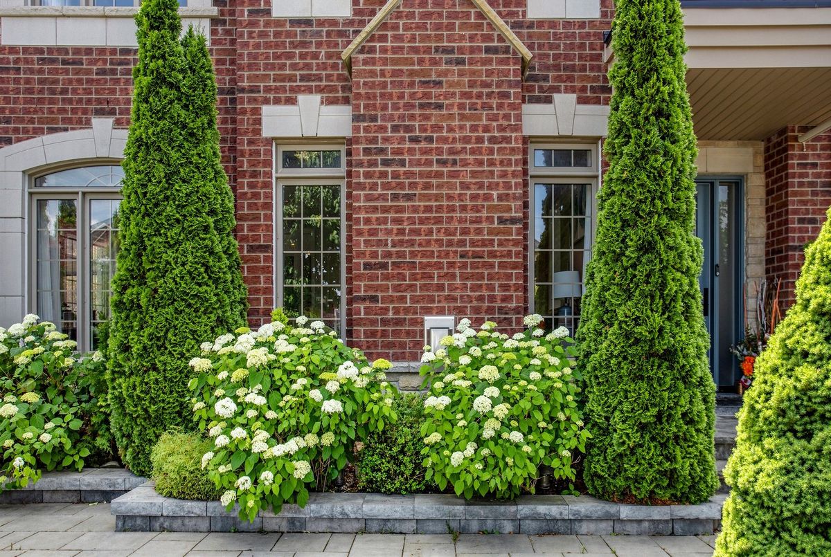 1116 Veterans Way 1116 Veterans Way Newmarket
