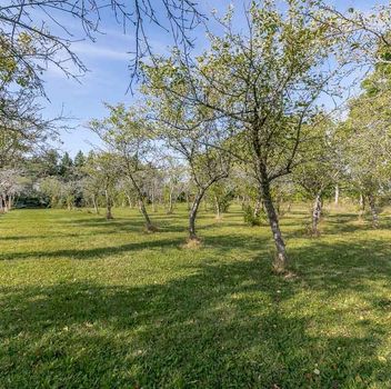 Residential Freehold 3515 Sideroad 10 N/A Bradford West Gwillimbury For {
  "AboveGradeFinishedArea": 0,
  "AboveGradeFinishedAreaSource": "",
  "AboveGradeFinishedAreaUnits": "",
  "Acreage": "",
  "Active": true,
  "Address": "3515 Sideroad 10 N/A",
  "AirConditioning": "Central Air",
  "AirConditioningYN": false,
  "Amps": "",
  "Appliances": "",
  "ApproxAge": "",
  "ApproxSquareFootage": "1500-2000",
  "Area": "Simcoe",
  "AssessmentYear": "",
  "AssignmentYN": false,
  "AssociationAmenities": "",
  "AssociationFee": "",
  "AssociationFeeIncludes": "",
  "AssociationName": "",
  "AssociationYN": false,
  "Balcony": "",
  "Basement": "Partially Finished, Walk-Out",
  "BasementYN": false,
  "BathroomsFull": 0,
  "BathroomsHalf": 0,
  "Bedrooms": 3,
  "BedroomsDisplay": "3+1",
  "BedroomsPlus": 1,
  "BedroomsTotal": 4,
  "BelowGradeFinishedArea": 0,
  "BelowGradeFinishedAreaSource": "",
  "BelowGradeFinishedAreaUnits": "",
  "Board": "Toronto Regional Real Estate Board",
  "BuilderName": "",
  "BuildingAreaTotal": "",
  "BuildingAreaUnits": "",
  "BuildingName": "",
  "BusinessName": "",
  "BusinessType": "",
  "BuyerAgencyCompensation": "2.5%",
  "BuyerAgencyCompensationType": "",
  "BuyerAgentAOR": "",
  "BuyerAgentEmail": "",
  "BuyerAgentFullName": "",
  "BuyerAgentId": "",
  "BuyerAgentMlsId": "",
  "BuyerAgentPhone": "",
  "BuyerOfficeId": "",
  "BuyerOfficeMlsId": "",
  "BuyerOfficeName": "",
  "BuyerOfficePhone": "",
  "CarportSpaces": 0,
  "Category": "MLS",
  "ChattelsYN": false,
  "City": "Bradford West Gwillimbury",
  "ClassSearch": "Residential",
  "ClosedDate": "0001-01-01T00:00:00",
  "CoListAgentDesignation": "",
  "CoListAgentEmail": "",
  "CoListAgentID": "",
  "CoListAgentMLSID": "",
  "CoListAgentName": "",
  "CoListAgentPhone": "",
  "CoListOfficeID": "248506",
  "CoListOfficeMLSID": "248506",
  "CoListOfficeName": "CENTURY 21 HERITAGE GROUP LTD.",
  "CommercialCondoFee": "",
  "CommercialCondoFeeFrequency": "",
  "CommercialCondoFees": "",
  "Commission": "2.5%",
  "Community": "Bradford",
  "CommunityFeatures": "",
  "Condition": "",
  "ConditionalExpiryDate": "0001-01-01T00:00:00",
  "ConditionOfSale": "",
  "CondoCorpNumber": "",
  "ConsentToAdvertiseYN": true,
  "ConstructionMaterials": "Brick, Stone",
  "ContactAfterExpiryYN": false,
  "ContractDate": "2026-09-23T00:00:00",
  "Cooling": "Central Air",
  "CoolingYN": false,
  "Country": "",
  "CoverPhoto": "https://media.remarketer.ca/PROPTX/N13821630-1.jpg?tr=di-propertynoimage_pj5ksb5iM,f-jpg,q-90",
  "CrossStreet": "Sideroad 10 & Line 10",
  "DaysOnMarket": 0,
  "DepositRequired": "",
  "Directions": "Sideroad 10 & Line 10",
  "Disclosures": "",
  "DisplayAddress": "3515 Sideroad 10 N/A",
  "DisplayAddressYN": true,
  "DistributeToInternetYN": true,
  "Drive": "",
  "Electric": "",
  "ElectricExpense": "",
  "ElectricOnPropertyYN": false,
  "ElectricYN": false,
  "ElementarySchool": "",
  "ElevatorYN": false,
  "Exclusions": "N/A",
  "Expenses": "",
  "ExpiryDate": "2027-01-16T00:00:00",
  "Exposure": "",
  "Exterior": "",
  "ExteriorFeatures": "",
  "Extras": "",
  "FamilyRoom": "",
  "FireplaceTotal": 0,
  "FireplaceYN": true,
  "Flooring": "",
  "FloorPlans": "",
  "FoundationDetails": "Concrete Block",
  "Franchise": "",
  "FranchiseYN": false,
  "FurnishedYN": false,
  "GarageSpaces": 2,
  "GarageType": "Detached",
  "GarageYN": true,
  "GasYN": false,
  "Geometry": {
    "lat": 44.1414,
    "lon": -79.6086
  },
  "GymYN": false,
  "HeatingYN": false,
  "HeatSource": "Oil",
  "HeatType": "Forced Air",
  "HighSchool": "",
  "HoldoverDays": "90",
  "id": "N13821630_PROPTX",
  "IDX": "Y",
  "IDXYN": true,
  "Inclusions": "Compare To Lots In Town, Tons Of Value In This Property. Wonderful Location. Fridge, Washer, Dryer, Built In Dishwasher",
  "InteriorFeatures": "In-Law Capability",
  "Kitchens": 1,
  "KitchensPlus": 0,
  "LandLeaseAmount": "",
  "LandLeaseYN": false,
  "LastStatus": "New",
  "Latitude": 44.1414,
  "LaundryFeatures": "",
  "LaundryLevel": "",
  "Lease": "",
  "LeaseAgreement": "",
  "LeaseAgreementYN": false,
  "LeaseFrequency": "",
  "LeaseTerm": "",
  "LegalDescription": "",
  "Level": "",
  "ListAgentDesignation": "",
  "ListAgentEmail": "",
  "ListAgentID": "9546639",
  "ListAgentMLSID": "9546639",
  "ListAgentName": "PETER FERRAGINE, Salesperson",
  "ListAgentPhone": "",
  "ListAOR": "Toronto Regional Real Estate Board",
  "ListBrokerage": "CENTURY 21 HERITAGE GROUP LTD.",
  "ListingEntryDate": "2026-09-23T23:52:57",
  "ListingId": "N13821630",
  "ListingKey": "N13821630",
  "ListOfficeID": "248506",
  "ListOfficeMLSID": "248506",
  "ListOfficePhone": "",
  "ListPrice": 999999,
  "ListPricePerUnit": 0,
  "ListPriceUnit": "",
  "LivingArea": "1500-2000",
  "LivingAreaSource": "",
  "LivingAreaUnits": "",
  "Locker": "",
  "Longitude": -79.6086,
  "LotDepth": 756.02,
  "LotFeatures": "",
  "LotFront": 275.85,
  "LotIrregularities": "",
  "LotShape": "",
  "LotSizeArea": "",
  "LotSizeAreaUnits": "",
  "LotSizeCode": "Feet",
  "LotSizeDimensions": "",
  "Maintenance": "",
  "Media": [
    {
      "id": "58fdfa9d-71ca-4453-8d9c-cfa61423bfba-nw_PROPTX",
      "ListingId": "N13821630",
      "ListingKey": "N13821630",
      "MediaId": "58fdfa9d-71ca-4453-8d9c-cfa61423bfba-nw",
      "ModificationTimestamp": "2026-09-23T23:52:57",
      "MediaOrder": 1,
      "Active": true,
      "MediaSize": "",
      "ResourceName": "Property",
      "ClassName": "ResidentialFree",
      "MediaDescription": "",
      "PreferredPhotoYN": true,
      "WaterMarkYN": false,
      "MediaName": "",
      "MediaCategory": "Photo",
      "MediaHTML": "",
      "MediaType": "image/jpeg",
      "MediaUrl": "https://trreb-image.ampre.ca/eIUkRtLkTZRSQPp_w6CX8yc_iVpYNDutOD8R4WueE4U/rs:fit:3840:3840/L3RycmViL2xpc3RpbmdzLzQ0LzczLzQxLzkyL3AvNThmZGZhOWQtNzFjYS00NDUzLThkOWMtY2ZhNjE0MjNiZmJhLmpwZw.jpg",
      "MediaWidth": "1200",
      "MediaHeight": "800",
      "MediaStatus": "Active",
      "Source": "PROPTX",
      "OriginatingSystemName": "",
      "RTimestampSql": "2026-09-24T00:05:16.31"
    },
    {
      "id": "59fe1a57-d385-4736-bae9-d089e6be80c7-nw_PROPTX",
      "ListingId": "N13821630",
      "ListingKey": "N13821630",
      "MediaId": "59fe1a57-d385-4736-bae9-d089e6be80c7-nw",
      "ModificationTimestamp": "2026-09-23T23:52:57",
      "MediaOrder": 2,
      "Active": true,
      "MediaSize": "",
      "ResourceName": "Property",
      "ClassName": "ResidentialFree",
      "MediaDescription": "",
      "PreferredPhotoYN": false,
      "WaterMarkYN": false,
      "MediaName": "",
      "MediaCategory": "Photo",
      "MediaHTML": "",
      "MediaType": "image/jpeg",
      "MediaUrl": "https://trreb-image.ampre.ca/jI6A6cXbm4Xtjjf2Tq7g48RVPV6RlHc0Nn_AxVzsqcQ/rs:fit:3840:3840/L3RycmViL2xpc3RpbmdzLzQ0LzczLzQxLzkyL3AvNTlmZTFhNTctZDM4NS00NzM2LWJhZTktZDA4OWU2YmU4MGM3LmpwZw.jpg",
      "MediaWidth": "1200",
      "MediaHeight": "800",
      "MediaStatus": "Active",
      "Source": "PROPTX",
      "OriginatingSystemName": "",
      "RTimestampSql": "2026-09-24T00:05:16.343"
    },
    {
      "id": "beae29e6-130b-4529-aba0-07351f6100c6-nw_PROPTX",
      "ListingId": "N13821630",
      "ListingKey": "N13821630",
      "MediaId": "beae29e6-130b-4529-aba0-07351f6100c6-nw",
      "ModificationTimestamp": "2026-09-23T23:52:57",
      "MediaOrder": 3,
      "Active": true,
      "MediaSize": "",
      "ResourceName": "Property",
      "ClassName": "ResidentialFree",
      "MediaDescription": "",
      "PreferredPhotoYN": false,
      "WaterMarkYN": false,
      "MediaName": "",
      "MediaCategory": "Photo",
      "MediaHTML": "",
      "MediaType": "image/jpeg",
      "MediaUrl": "https://trreb-image.ampre.ca/QEghrMmXYi1bPQ-0sQ3DfMzRS7-qnU3I5vYQrCZ0TKU/rs:fit:3840:3840/L3RycmViL2xpc3RpbmdzLzQ0LzczLzQxLzkyL3AvYmVhZTI5ZTYtMTMwYi00NTI5LWFiYTAtMDczNTFmNjEwMGM2LmpwZw.jpg",
      "MediaWidth": "1200",
      "MediaHeight": "800",
      "MediaStatus": "Active",
      "Source": "PROPTX",
      "OriginatingSystemName": "",
      "RTimestampSql": "2026-09-24T00:05:16.767"
    },
    {
      "id": "774d0960-775f-42c0-b369-a3895ce8831b-nw_PROPTX",
      "ListingId": "N13821630",
      "ListingKey": "N13821630",
      "MediaId": "774d0960-775f-42c0-b369-a3895ce8831b-nw",
      "ModificationTimestamp": "2026-09-23T23:52:57",
      "MediaOrder": 4,
      "Active": true,
      "MediaSize": "",
      "ResourceName": "Property",
      "ClassName": "ResidentialFree",
      "MediaDescription": "",
      "PreferredPhotoYN": false,
      "WaterMarkYN": false,
      "MediaName": "",
      "MediaCategory": "Photo",
      "MediaHTML": "",
      "MediaType": "image/jpeg",
      "MediaUrl": "https://trreb-image.ampre.ca/rg4BwsrGLEnGchJ4gvTzyMUaxVSEGWGMC7u_G_uQVjw/rs:fit:3840:3840/L3RycmViL2xpc3RpbmdzLzQ0LzczLzQxLzkyL3AvNzc0ZDA5NjAtNzc1Zi00MmMwLWIzNjktYTM4OTVjZTg4MzFiLmpwZw.jpg",
      "MediaWidth": "1200",
      "MediaHeight": "800",
      "MediaStatus": "Active",
      "Source": "PROPTX",
      "OriginatingSystemName": "",
      "RTimestampSql": "2026-09-24T00:05:16.397"
    },
    {
      "id": "1f7c0676-d657-4c8f-9b27-9f98981c5a38-nw_PROPTX",
      "ListingId": "N13821630",
      "ListingKey": "N13821630",
      "MediaId": "1f7c0676-d657-4c8f-9b27-9f98981c5a38-nw",
      "ModificationTimestamp": "2026-09-23T23:52:57",
      "MediaOrder": 5,
      "Active": true,
      "MediaSize": "",
      "ResourceName": "Property",
      "ClassName": "ResidentialFree",
      "MediaDescription": "",
      "PreferredPhotoYN": false,
      "WaterMarkYN": false,
      "MediaName": "",
      "MediaCategory": "Photo",
      "MediaHTML": "",
      "MediaType": "image/jpeg",
      "MediaUrl": "https://trreb-image.ampre.ca/bNS4_jUsrVzh_hJ-J3N5rCvgID3BL3k5WB0XVSuzOTw/rs:fit:3840:3840/L3RycmViL2xpc3RpbmdzLzQ0LzczLzQxLzkyL3AvMWY3YzA2NzYtZDY1Ny00YzhmLTliMjctOWY5ODk4MWM1YTM4LmpwZw.jpg",
      "MediaWidth": "1200",
      "MediaHeight": "800",
      "MediaStatus": "Active",
      "Source": "PROPTX",
      "OriginatingSystemName": "",
      "RTimestampSql": "2026-09-24T00:05:16.143"
    },
    {
      "id": "7f395855-ebb3-49e7-9f5c-d38b86420b70-nw_PROPTX",
      "ListingId": "N13821630",
      "ListingKey": "N13821630",
      "MediaId": "7f395855-ebb3-49e7-9f5c-d38b86420b70-nw",
      "ModificationTimestamp": "2026-09-23T23:52:57",
      "MediaOrder": 6,
      "Active": true,
      "MediaSize": "",
      "ResourceName": "Property",
      "ClassName": "ResidentialFree",
      "MediaDescription": "",
      "PreferredPhotoYN": false,
      "WaterMarkYN": false,
      "MediaName": "",
      "MediaCategory": "Photo",
      "MediaHTML": "",
      "MediaType": "image/jpeg",
      "MediaUrl": "https://trreb-image.ampre.ca/9VOWjV0-fj9WJvBTzWODSPJb8KK7XR65Z1l1JlqatRI/rs:fit:3840:3840/L3RycmViL2xpc3RpbmdzLzQ0LzczLzQxLzkyL3AvN2YzOTU4NTUtZWJiMy00OWU3LTlmNWMtZDM4Yjg2NDIwYjcwLmpwZw.jpg",
      "MediaWidth": "1200",
      "MediaHeight": "800",
      "MediaStatus": "Active",
      "Source": "PROPTX",
      "OriginatingSystemName": "",
      "RTimestampSql": "2026-09-24T00:05:16.417"
    },
    {
      "id": "151b4017-d2ab-459a-93aa-0e4736acef39-nw_PROPTX",
      "ListingId": "N13821630",
      "ListingKey": "N13821630",
      "MediaId": "151b4017-d2ab-459a-93aa-0e4736acef39-nw",
      "ModificationTimestamp": "2026-09-23T23:52:57",
      "MediaOrder": 7,
      "Active": true,
      "MediaSize": "",
      "ResourceName": "Property",
      "ClassName": "ResidentialFree",
      "MediaDescription": "",
      "PreferredPhotoYN": false,
      "WaterMarkYN": false,
      "MediaName": "",
      "MediaCategory": "Photo",
      "MediaHTML": "",
      "MediaType": "image/jpeg",
      "MediaUrl": "https://trreb-image.ampre.ca/OHjV5F6-NBo58Oqi2RUFbGXwA8A8c8eHPpHvHRr39qk/rs:fit:3840:3840/L3RycmViL2xpc3RpbmdzLzQ0LzczLzQxLzkyL3AvMTUxYjQwMTctZDJhYi00NTlhLTkzYWEtMGU0NzM2YWNlZjM5LmpwZw.jpg",
      "MediaWidth": "1200",
      "MediaHeight": "800",
      "MediaStatus": "Active",
      "Source": "PROPTX",
      "OriginatingSystemName": "",
      "RTimestampSql": "2026-09-24T00:05:16.04"
    },
    {
      "id": "ab116071-3025-441e-b1e8-4f2891513d85-nw_PROPTX",
      "ListingId": "N13821630",
      "ListingKey": "N13821630",
      "MediaId": "ab116071-3025-441e-b1e8-4f2891513d85-nw",
      "ModificationTimestamp": "2026-09-23T23:52:57",
      "MediaOrder": 8,
      "Active": true,
      "MediaSize": "",
      "ResourceName": "Property",
      "ClassName": "ResidentialFree",
      "MediaDescription": "",
      "PreferredPhotoYN": false,
      "WaterMarkYN": false,
      "MediaName": "",
      "MediaCategory": "Photo",
      "MediaHTML": "",
      "MediaType": "image/jpeg",
      "MediaUrl": "https://trreb-image.ampre.ca/l-P91hqdP0M_PtqPiWy6ucJ6J9b4aKw4azjRtU3Ko_o/rs:fit:3840:3840/L3RycmViL2xpc3RpbmdzLzQ0LzczLzQxLzkyL3AvYWIxMTYwNzEtMzAyNS00NDFlLWIxZTgtNGYyODkxNTEzZDg1LmpwZw.jpg",
      "MediaWidth": "1200",
      "MediaHeight": "800",
      "MediaStatus": "Active",
      "Source": "PROPTX",
      "OriginatingSystemName": "",
      "RTimestampSql": "2026-09-24T00:05:16.7"
    },
    {
      "id": "fc96f80f-d4c6-4edf-99f5-45ec09a0789e-nw_PROPTX",
      "ListingId": "N13821630",
      "ListingKey": "N13821630",
      "MediaId": "fc96f80f-d4c6-4edf-99f5-45ec09a0789e-nw",
      "ModificationTimestamp": "2026-09-23T23:52:57",
      "MediaOrder": 9,
      "Active": true,
      "MediaSize": "",
      "ResourceName": "Property",
      "ClassName": "ResidentialFree",
      "MediaDescription": "",
      "PreferredPhotoYN": false,
      "WaterMarkYN": false,
      "MediaName": "",
      "MediaCategory": "Photo",
      "MediaHTML": "",
      "MediaType": "image/jpeg",
      "MediaUrl": "https://trreb-image.ampre.ca/cPxNc1SWxX1VB5hSbQCaWw2jFzKGpfOOtVFYQRp5MQ0/rs:fit:3840:3840/L3RycmViL2xpc3RpbmdzLzQ0LzczLzQxLzkyL3AvZmM5NmY4MGYtZDRjNi00ZWRmLTk5ZjUtNDVlYzA5YTA3ODllLmpwZw.jpg",
      "MediaWidth": "1200",
      "MediaHeight": "800",
      "MediaStatus": "Active",
      "Source": "PROPTX",
      "OriginatingSystemName": "",
      "RTimestampSql": "2026-09-24T00:05:16.967"
    },
    {
      "id": "8ec7cb76-cde4-42e3-ab7a-40ba4f941471-nw_PROPTX",
      "ListingId": "N13821630",
      "ListingKey": "N13821630",
      "MediaId": "8ec7cb76-cde4-42e3-ab7a-40ba4f941471-nw",
      "ModificationTimestamp": "2026-09-23T23:52:57",
      "MediaOrder": 10,
      "Active": true,
      "MediaSize": "",
      "ResourceName": "Property",
      "ClassName": "ResidentialFree",
      "MediaDescription": "",
      "PreferredPhotoYN": false,
      "WaterMarkYN": false,
      "MediaName": "",
      "MediaCategory": "Photo",
      "MediaHTML": "",
      "MediaType": "image/jpeg",
      "MediaUrl": "https://trreb-image.ampre.ca/WzZd-2LIgfYcybn_LBXhmaWOE5V32DBpFJyRy7716gs/rs:fit:3840:3840/L3RycmViL2xpc3RpbmdzLzQ0LzczLzQxLzkyL3AvOGVjN2NiNzYtY2RlNC00MmUzLWFiN2EtNDBiYTRmOTQxNDcxLmpwZw.jpg",
      "MediaWidth": "1200",
      "MediaHeight": "800",
      "MediaStatus": "Active",
      "Source": "PROPTX",
      "OriginatingSystemName": "",
      "RTimestampSql": "2026-09-24T00:05:16.553"
    },
    {
      "id": "f4485bb9-295a-4b28-ac47-a69857cfe4fe-nw_PROPTX",
      "ListingId": "N13821630",
      "ListingKey": "N13821630",
      "MediaId": "f4485bb9-295a-4b28-ac47-a69857cfe4fe-nw",
      "ModificationTimestamp": "2026-09-23T23:52:57",
      "MediaOrder": 11,
      "Active": true,
      "MediaSize": "",
      "ResourceName": "Property",
      "ClassName": "ResidentialFree",
      "MediaDescription": "",
      "PreferredPhotoYN": false,
      "WaterMarkYN": false,
      "MediaName": "",
      "MediaCategory": "Photo",
      "MediaHTML": "",
      "MediaType": "image/jpeg",
      "MediaUrl": "https://trreb-image.ampre.ca/DdYmXB5jMtrhDbFubba5BLJs1p5QDdz0aZNhxAeLaN8/rs:fit:3840:3840/L3RycmViL2xpc3RpbmdzLzQ0LzczLzQxLzkyL3AvZjQ0ODViYjktMjk1YS00YjI4LWFjNDctYTY5ODU3Y2ZlNGZlLmpwZw.jpg",
      "MediaWidth": "1200",
      "MediaHeight": "800",
      "MediaStatus": "Active",
      "Source": "PROPTX",
      "OriginatingSystemName": "",
      "RTimestampSql": "2026-09-24T00:05:16.93"
    },
    {
      "id": "0b7e845f-e8a6-43d1-bb58-b55ca50d8db5-nw_PROPTX",
      "ListingId": "N13821630",
      "ListingKey": "N13821630",
      "MediaId": "0b7e845f-e8a6-43d1-bb58-b55ca50d8db5-nw",
      "ModificationTimestamp": "2026-09-23T23:52:57",
      "MediaOrder": 12,
      "Active": true,
      "MediaSize": "",
      "ResourceName": "Property",
      "ClassName": "ResidentialFree",
      "MediaDescription": "",
      "PreferredPhotoYN": false,
      "WaterMarkYN": false,
      "MediaName": "",
      "MediaCategory": "Photo",
      "MediaHTML": "",
      "MediaType": "image/jpeg",
      "MediaUrl": "https://trreb-image.ampre.ca/13IcKlHzKA-sF2vjuDGy_gDfaQMOkG1_v5dqMlc8Q4Y/rs:fit:3840:3840/L3RycmViL2xpc3RpbmdzLzQ0LzczLzQxLzkyL3AvMGI3ZTg0NWYtZThhNi00M2QxLWJiNTgtYjU1Y2E1MGQ4ZGI1LmpwZw.jpg",
      "MediaWidth": "1200",
      "MediaHeight": "800",
      "MediaStatus": "Active",
      "Source": "PROPTX",
      "OriginatingSystemName": "",
      "RTimestampSql": "2026-09-24T00:05:15.977"
    },
    {
      "id": "6e87864e-531f-481b-a5e7-b6e5c988ecb5-nw_PROPTX",
      "ListingId": "N13821630",
      "ListingKey": "N13821630",
      "MediaId": "6e87864e-531f-481b-a5e7-b6e5c988ecb5-nw",
      "ModificationTimestamp": "2026-09-23T23:52:57",
      "MediaOrder": 13,
      "Active": true,
      "MediaSize": "",
      "ResourceName": "Property",
      "ClassName": "ResidentialFree",
      "MediaDescription": "",
      "PreferredPhotoYN": false,
      "WaterMarkYN": false,
      "MediaName": "",
      "MediaCategory": "Photo",
      "MediaHTML": "",
      "MediaType": "image/jpeg",
      "MediaUrl": "https://trreb-image.ampre.ca/kSQ4CqOJIZWR-QeBOYSh4QyhyP1te0HqxL87klR-jIw/rs:fit:3840:3840/L3RycmViL2xpc3RpbmdzLzQ0LzczLzQxLzkyL3AvNmU4Nzg2NGUtNTMxZi00ODFiLWE1ZTctYjZlNWM5ODhlY2I1LmpwZw.jpg",
      "MediaWidth": "1200",
      "MediaHeight": "800",
      "MediaStatus": "Active",
      "Source": "PROPTX",
      "OriginatingSystemName": "",
      "RTimestampSql": "2026-09-24T00:05:16.38"
    },
    {
      "id": "b0d62cc1-a40c-48ce-b75d-86c346c0748a-nw_PROPTX",
      "ListingId": "N13821630",
      "ListingKey": "N13821630",
      "MediaId": "b0d62cc1-a40c-48ce-b75d-86c346c0748a-nw",
      "ModificationTimestamp": "2026-09-23T23:52:57",
      "MediaOrder": 14,
      "Active": true,
      "MediaSize": "",
      "ResourceName": "Property",
      "ClassName": "ResidentialFree",
      "MediaDescription": "",
      "PreferredPhotoYN": false,
      "WaterMarkYN": false,
      "MediaName": "",
      "MediaCategory": "Photo",
      "MediaHTML": "",
      "MediaType": "image/jpeg",
      "MediaUrl": "https://trreb-image.ampre.ca/qNgbyUygLmzqGyEEfzP8EMQsdn6pFj6ee7uVX0XvLYo/rs:fit:3840:3840/L3RycmViL2xpc3RpbmdzLzQ0LzczLzQxLzkyL3AvYjBkNjJjYzEtYTQwYy00OGNlLWI3NWQtODZjMzQ2YzA3NDhhLmpwZw.jpg",
      "MediaWidth": "1200",
      "MediaHeight": "800",
      "MediaStatus": "Active",
      "Source": "PROPTX",
      "OriginatingSystemName": "",
      "RTimestampSql": "2026-09-24T00:05:16.727"
    },
    {
      "id": "f773a0b5-298d-40df-9b03-e175dc25ef6c-nw_PROPTX",
      "ListingId": "N13821630",
      "ListingKey": "N13821630",
      "MediaId": "f773a0b5-298d-40df-9b03-e175dc25ef6c-nw",
      "ModificationTimestamp": "2026-09-23T23:52:57",
      "MediaOrder": 15,
      "Active": true,
      "MediaSize": "",
      "ResourceName": "Property",
      "ClassName": "ResidentialFree",
      "MediaDescription": "",
      "PreferredPhotoYN": false,
      "WaterMarkYN": false,
      "MediaName": "",
      "MediaCategory": "Photo",
      "MediaHTML": "",
      "MediaType": "image/jpeg",
      "MediaUrl": "https://trreb-image.ampre.ca/aSpIKAK5P33oAlLwaKjiz37yoCLOtFor6so_5jwmYD8/rs:fit:3840:3840/L3RycmViL2xpc3RpbmdzLzQ0LzczLzQxLzkyL3AvZjc3M2EwYjUtMjk4ZC00MGRmLTliMDMtZTE3NWRjMjVlZjZjLmpwZw.jpg",
      "MediaWidth": "1200",
      "MediaHeight": "800",
      "MediaStatus": "Active",
      "Source": "PROPTX",
      "OriginatingSystemName": "",
      "RTimestampSql": "2026-09-24T00:05:16.95"
    },
    {
      "id": "245697d4-0a64-41cf-8ab7-8018ef8705f6-nw_PROPTX",
      "ListingId": "N13821630",
      "ListingKey": "N13821630",
      "MediaId": "245697d4-0a64-41cf-8ab7-8018ef8705f6-nw",
      "ModificationTimestamp": "2026-09-23T23:52:57",
      "MediaOrder": 16,
      "Active": true,
      "MediaSize": "",
      "ResourceName": "Property",
      "ClassName": "ResidentialFree",
      "MediaDescription": "",
      "PreferredPhotoYN": false,
      "WaterMarkYN": false,
      "MediaName": "",
      "MediaCategory": "Photo",
      "MediaHTML": "",
      "MediaType": "image/jpeg",
      "MediaUrl": "https://trreb-image.ampre.ca/oIObEf5MSCX0TPSTL8jLWk-3h7DFj2ShBbdCtpRVXlE/rs:fit:3840:3840/L3RycmViL2xpc3RpbmdzLzQ0LzczLzQxLzkyL3AvMjQ1Njk3ZDQtMGE2NC00MWNmLThhYjctODAxOGVmODcwNWY2LmpwZw.jpg",
      "MediaWidth": "1200",
      "MediaHeight": "800",
      "MediaStatus": "Active",
      "Source": "PROPTX",
      "OriginatingSystemName": "",
      "RTimestampSql": "2026-09-24T00:05:16.17"
    },
    {
      "id": "3cc5d4fb-7075-422a-ac7c-2dc03ccb8b31-nw_PROPTX",
      "ListingId": "N13821630",
      "ListingKey": "N13821630",
      "MediaId": "3cc5d4fb-7075-422a-ac7c-2dc03ccb8b31-nw",
      "ModificationTimestamp": "2026-09-23T23:52:57",
      "MediaOrder": 17,
      "Active": true,
      "MediaSize": "",
      "ResourceName": "Property",
      "ClassName": "ResidentialFree",
      "MediaDescription": "",
      "PreferredPhotoYN": false,
      "WaterMarkYN": false,
      "MediaName": "",
      "MediaCategory": "Photo",
      "MediaHTML": "",
      "MediaType": "image/jpeg",
      "MediaUrl": "https://trreb-image.ampre.ca/qriWh2N1gdS_o6hkg-wPMHjzY3Fooibb87fz6pJhKEo/rs:fit:3840:3840/L3RycmViL2xpc3RpbmdzLzQ0LzczLzQxLzkyL3AvM2NjNWQ0ZmItNzA3NS00MjJhLWFjN2MtMmRjMDNjY2I4YjMxLmpwZw.jpg",
      "MediaWidth": "1200",
      "MediaHeight": "800",
      "MediaStatus": "Active",
      "Source": "PROPTX",
      "OriginatingSystemName": "",
      "RTimestampSql": "2026-09-24T00:05:16.23"
    },
    {
      "id": "8c3af677-a90c-4d83-9773-4d62b66329d9-nw_PROPTX",
      "ListingId": "N13821630",
      "ListingKey": "N13821630",
      "MediaId": "8c3af677-a90c-4d83-9773-4d62b66329d9-nw",
      "ModificationTimestamp": "2026-09-23T23:52:57",
      "MediaOrder": 18,
      "Active": true,
      "MediaSize": "",
      "ResourceName": "Property",
      "ClassName": "ResidentialFree",
      "MediaDescription": "",
      "PreferredPhotoYN": false,
      "WaterMarkYN": false,
      "MediaName": "",
      "MediaCategory": "Photo",
      "MediaHTML": "",
      "MediaType": "image/jpeg",
      "MediaUrl": "https://trreb-image.ampre.ca/xDdOlPO2kwLKQWcKCq3NbjA3bMKzpyWfV1tUMMOWs-4/rs:fit:3840:3840/L3RycmViL2xpc3RpbmdzLzQ0LzczLzQxLzkyL3AvOGMzYWY2NzctYTkwYy00ZDgzLTk3NzMtNGQ2MmI2NjMyOWQ5LmpwZw.jpg",
      "MediaWidth": "1200",
      "MediaHeight": "800",
      "MediaStatus": "Active",
      "Source": "PROPTX",
      "OriginatingSystemName": "",
      "RTimestampSql": "2026-09-24T00:05:16.533"
    },
    {
      "id": "15cb4b51-481d-4d71-9a18-e52a1b670e46-nw_PROPTX",
      "ListingId": "N13821630",
      "ListingKey": "N13821630",
      "MediaId": "15cb4b51-481d-4d71-9a18-e52a1b670e46-nw",
      "ModificationTimestamp": "2026-09-23T23:52:57",
      "MediaOrder": 19,
      "Active": true,
      "MediaSize": "",
      "ResourceName": "Property",
      "ClassName": "ResidentialFree",
      "MediaDescription": "",
      "PreferredPhotoYN": false,
      "WaterMarkYN": false,
      "MediaName": "",
      "MediaCategory": "Photo",
      "MediaHTML": "",
      "MediaType": "image/jpeg",
      "MediaUrl": "https://trreb-image.ampre.ca/R_F5eDzF3STr3CPKUfFj0S9Rzk7nMB8vW5osmw_Lv-k/rs:fit:3840:3840/L3RycmViL2xpc3RpbmdzLzQ0LzczLzQxLzkyL3AvMTVjYjRiNTEtNDgxZC00ZDcxLTlhMTgtZTUyYTFiNjcwZTQ2LmpwZw.jpg",
      "MediaWidth": "1200",
      "MediaHeight": "800",
      "MediaStatus": "Active",
      "Source": "PROPTX",
      "OriginatingSystemName": "",
      "RTimestampSql": "2026-09-24T00:05:16.057"
    },
    {
      "id": "d0ffe1be-61b1-4eec-8896-184662cefd4d-nw_PROPTX",
      "ListingId": "N13821630",
      "ListingKey": "N13821630",
      "MediaId": "d0ffe1be-61b1-4eec-8896-184662cefd4d-nw",
      "ModificationTimestamp": "2026-09-23T23:52:57",
      "MediaOrder": 20,
      "Active": true,
      "MediaSize": "",
      "ResourceName": "Property",
      "ClassName": "ResidentialFree",
      "MediaDescription": "",
      "PreferredPhotoYN": false,
      "WaterMarkYN": false,
      "MediaName": "",
      "MediaCategory": "Photo",
      "MediaHTML": "",
      "MediaType": "image/jpeg",
      "MediaUrl": "https://trreb-image.ampre.ca/HMrHwdPMJXZvexpVHlFHADaQdYibi8DmkdyIeAkeYZo/rs:fit:3840:3840/L3RycmViL2xpc3RpbmdzLzQ0LzczLzQxLzkyL3AvZDBmZmUxYmUtNjFiMS00ZWVjLTg4OTYtMTg0NjYyY2VmZDRkLmpwZw.jpg",
      "MediaWidth": "1200",
      "MediaHeight": "800",
      "MediaStatus": "Active",
      "Source": "PROPTX",
      "OriginatingSystemName": "",
      "RTimestampSql": "2026-09-24T00:05:16.82"
    },
    {
      "id": "d46dcc8c-5df7-41e0-85e7-cc613d34a695-nw_PROPTX",
      "ListingId": "N13821630",
      "ListingKey": "N13821630",
      "MediaId": "d46dcc8c-5df7-41e0-85e7-cc613d34a695-nw",
      "ModificationTimestamp": "2026-09-23T23:52:57",
      "MediaOrder": 21,
      "Active": true,
      "MediaSize": "",
      "ResourceName": "Property",
      "ClassName": "ResidentialFree",
      "MediaDescription": "",
      "PreferredPhotoYN": false,
      "WaterMarkYN": false,
      "MediaName": "",
      "MediaCategory": "Photo",
      "MediaHTML": "",
      "MediaType": "image/jpeg",
      "MediaUrl": "https://trreb-image.ampre.ca/EH5o5vzTcX1jQe47CfFFoqPMyprTSdfz_sAbjx9oSPI/rs:fit:3840:3840/L3RycmViL2xpc3RpbmdzLzQ0LzczLzQxLzkyL3AvZDQ2ZGNjOGMtNWRmNy00MWUwLTg1ZTctY2M2MTNkMzRhNjk1LmpwZw.jpg",
      "MediaWidth": "1200",
      "MediaHeight": "800",
      "MediaStatus": "Active",
      "Source": "PROPTX",
      "OriginatingSystemName": "",
      "RTimestampSql": "2026-09-24T00:05:16.84"
    },
    {
      "id": "e6f65eea-5fc8-4cae-a5cf-58ca9d0abea6-nw_PROPTX",
      "ListingId": "N13821630",
      "ListingKey": "N13821630",
      "MediaId": "e6f65eea-5fc8-4cae-a5cf-58ca9d0abea6-nw",
      "ModificationTimestamp": "2026-09-23T23:52:57",
      "MediaOrder": 22,
      "Active": true,
      "MediaSize": "",
      "ResourceName": "Property",
      "ClassName": "ResidentialFree",
      "MediaDescription": "",
      "PreferredPhotoYN": false,
      "WaterMarkYN": false,
      "MediaName": "",
      "MediaCategory": "Photo",
      "MediaHTML": "",
      "MediaType": "image/jpeg",
      "MediaUrl": "https://trreb-image.ampre.ca/Z0d2GCMO_ro8VTgmQoq1Lwan7uR_Km48QsgAnoL6bcE/rs:fit:3840:3840/L3RycmViL2xpc3RpbmdzLzQ0LzczLzQxLzkyL3AvZTZmNjVlZWEtNWZjOC00Y2FlLWE1Y2YtNThjYTlkMGFiZWE2LmpwZw.jpg",
      "MediaWidth": "1200",
      "MediaHeight": "800",
      "MediaStatus": "Active",
      "Source": "PROPTX",
      "OriginatingSystemName": "",
      "RTimestampSql": "2026-09-24T00:05:16.887"
    },
    {
      "id": "4ebd3b76-92b4-49de-94c1-f230ab405e6d-nw_PROPTX",
      "ListingId": "N13821630",
      "ListingKey": "N13821630",
      "MediaId": "4ebd3b76-92b4-49de-94c1-f230ab405e6d-nw",
      "ModificationTimestamp": "2026-09-23T23:52:57",
      "MediaOrder": 23,
      "Active": true,
      "MediaSize": "",
      "ResourceName": "Property",
      "ClassName": "ResidentialFree",
      "MediaDescription": "",
      "PreferredPhotoYN": false,
      "WaterMarkYN": false,
      "MediaName": "",
      "MediaCategory": "Photo",
      "MediaHTML": "",
      "MediaType": "image/jpeg",
      "MediaUrl": "https://trreb-image.ampre.ca/oePAXKl1Fs-62g_1T4uOmxePXV9oqWxFnrABPs9bWeU/rs:fit:3840:3840/L3RycmViL2xpc3RpbmdzLzQ0LzczLzQxLzkyL3AvNGViZDNiNzYtOTJiNC00OWRlLTk0YzEtZjIzMGFiNDA1ZTZkLmpwZw.jpg",
      "MediaWidth": "1200",
      "MediaHeight": "800",
      "MediaStatus": "Active",
      "Source": "PROPTX",
      "OriginatingSystemName": "",
      "RTimestampSql": "2026-09-24T00:05:16.273"
    },
    {
      "id": "4a6655e5-5a99-430b-b7ae-52c4b9cdfabe-nw_PROPTX",
      "ListingId": "N13821630",
      "ListingKey": "N13821630",
      "MediaId": "4a6655e5-5a99-430b-b7ae-52c4b9cdfabe-nw",
      "ModificationTimestamp": "2026-09-23T23:52:57",
      "MediaOrder": 24,
      "Active": true,
      "MediaSize": "",
      "ResourceName": "Property",
      "ClassName": "ResidentialFree",
      "MediaDescription": "",
      "PreferredPhotoYN": false,
      "WaterMarkYN": false,
      "MediaName": "",
      "MediaCategory": "Photo",
      "MediaHTML": "",
      "MediaType": "image/jpeg",
      "MediaUrl": "https://trreb-image.ampre.ca/sbHgqtfLQ2aSLePfQd69nl2Whw0ZnBJICfXMcHepsRE/rs:fit:3840:3840/L3RycmViL2xpc3RpbmdzLzQ0LzczLzQxLzkyL3AvNGE2NjU1ZTUtNWE5OS00MzBiLWI3YWUtNTJjNGI5Y2RmYWJlLmpwZw.jpg",
      "MediaWidth": "1200",
      "MediaHeight": "800",
      "MediaStatus": "Active",
      "Source": "PROPTX",
      "OriginatingSystemName": "",
      "RTimestampSql": "2026-09-24T00:05:16.257"
    },
    {
      "id": "236ee443-e3c7-407f-97f9-2c7f6bce5467-nw_PROPTX",
      "ListingId": "N13821630",
      "ListingKey": "N13821630",
      "MediaId": "236ee443-e3c7-407f-97f9-2c7f6bce5467-nw",
      "ModificationTimestamp": "2026-09-23T23:52:57",
      "MediaOrder": 25,
      "Active": true,
      "MediaSize": "",
      "ResourceName": "Property",
      "ClassName": "ResidentialFree",
      "MediaDescription": "",
      "PreferredPhotoYN": false,
      "WaterMarkYN": false,
      "MediaName": "",
      "MediaCategory": "Photo",
      "MediaHTML": "",
      "MediaType": "image/jpeg",
      "MediaUrl": "https://trreb-image.ampre.ca/d_CLEVfQLVUmh4ZYQGtE4wgylDyaR_9nFCfKIrIOj4Y/rs:fit:3840:3840/L3RycmViL2xpc3RpbmdzLzQ0LzczLzQxLzkyL3AvMjM2ZWU0NDMtZTNjNy00MDdmLTk3ZjktMmM3ZjZiY2U1NDY3LmpwZw.jpg",
      "MediaWidth": "1200",
      "MediaHeight": "800",
      "MediaStatus": "Active",
      "Source": "PROPTX",
      "OriginatingSystemName": "",
      "RTimestampSql": "2026-09-24T00:05:16.16"
    },
    {
      "id": "13b2abe2-acca-46da-bf48-3ba883bcdde6-nw_PROPTX",
      "ListingId": "N13821630",
      "ListingKey": "N13821630",
      "MediaId": "13b2abe2-acca-46da-bf48-3ba883bcdde6-nw",
      "ModificationTimestamp": "2026-09-23T23:52:57",
      "MediaOrder": 26,
      "Active": true,
      "MediaSize": "",
      "ResourceName": "Property",
      "ClassName": "ResidentialFree",
      "MediaDescription": "",
      "PreferredPhotoYN": false,
      "WaterMarkYN": false,
      "MediaName": "",
      "MediaCategory": "Photo",
      "MediaHTML": "",
      "MediaType": "image/jpeg",
      "MediaUrl": "https://trreb-image.ampre.ca/5X80QsVeHsGHb7bu35DGQG41A3lRdtl36yI3PnPvJKc/rs:fit:3840:3840/L3RycmViL2xpc3RpbmdzLzQ0LzczLzQxLzkyL3AvMTNiMmFiZTItYWNjYS00NmRhLWJmNDgtM2JhODgzYmNkZGU2LmpwZw.jpg",
      "MediaWidth": "1200",
      "MediaHeight": "800",
      "MediaStatus": "Active",
      "Source": "PROPTX",
      "OriginatingSystemName": "",
      "RTimestampSql": "2026-09-24T00:05:16.023"
    },
    {
      "id": "87e5a399-b43c-4f0c-8842-7fe7b698a290-nw_PROPTX",
      "ListingId": "N13821630",
      "ListingKey": "N13821630",
      "MediaId": "87e5a399-b43c-4f0c-8842-7fe7b698a290-nw",
      "ModificationTimestamp": "2026-09-23T23:52:57",
      "MediaOrder": 27,
      "Active": true,
      "MediaSize": "",
      "ResourceName": "Property",
      "ClassName": "ResidentialFree",
      "MediaDescription": "",
      "PreferredPhotoYN": false,
      "WaterMarkYN": false,
      "MediaName": "",
      "MediaCategory": "Photo",
      "MediaHTML": "",
      "MediaType": "image/jpeg",
      "MediaUrl": "https://trreb-image.ampre.ca/68TdcZpddXIDj70hWV1eJHlIG5umR1rik881YIJZKh0/rs:fit:3840:3840/L3RycmViL2xpc3RpbmdzLzQ0LzczLzQxLzkyL3AvODdlNWEzOTktYjQzYy00ZjBjLTg4NDItN2ZlN2I2OThhMjkwLmpwZw.jpg",
      "MediaWidth": "1200",
      "MediaHeight": "800",
      "MediaStatus": "Active",
      "Source": "PROPTX",
      "OriginatingSystemName": "",
      "RTimestampSql": "2026-09-24T00:05:16.52"
    },
    {
      "id": "e0323f5d-8db8-47b1-bbda-ffc72775aede-nw_PROPTX",
      "ListingId": "N13821630",
      "ListingKey": "N13821630",
      "MediaId": "e0323f5d-8db8-47b1-bbda-ffc72775aede-nw",
      "ModificationTimestamp": "2026-09-23T23:52:57",
      "MediaOrder": 28,
      "Active": true,
      "MediaSize": "",
      "ResourceName": "Property",
      "ClassName": "ResidentialFree",
      "MediaDescription": "",
      "PreferredPhotoYN": false,
      "WaterMarkYN": false,
      "MediaName": "",
      "MediaCategory": "Photo",
      "MediaHTML": "",
      "MediaType": "image/jpeg",
      "MediaUrl": "https://trreb-image.ampre.ca/spel-mlUzeuLGZC1tHBkDbGa4LHsYL66fCkzPkoG3Aw/rs:fit:3840:3840/L3RycmViL2xpc3RpbmdzLzQ0LzczLzQxLzkyL3AvZTAzMjNmNWQtOGRiOC00N2IxLWJiZGEtZmZjNzI3NzVhZWRlLmpwZw.jpg",
      "MediaWidth": "1200",
      "MediaHeight": "800",
      "MediaStatus": "Active",
      "Source": "PROPTX",
      "OriginatingSystemName": "",
      "RTimestampSql": "2026-09-24T00:05:16.863"
    },
    {
      "id": "5d05cae7-9750-4dc6-b9ac-b1f41019439f-nw_PROPTX",
      "ListingId": "N13821630",
      "ListingKey": "N13821630",
      "MediaId": "5d05cae7-9750-4dc6-b9ac-b1f41019439f-nw",
      "ModificationTimestamp": "2026-09-23T23:52:57",
      "MediaOrder": 29,
      "Active": true,
      "MediaSize": "",
      "ResourceName": "Property",
      "ClassName": "ResidentialFree",
      "MediaDescription": "",
      "PreferredPhotoYN": false,
      "WaterMarkYN": false,
      "MediaName": "",
      "MediaCategory": "Photo",
      "MediaHTML": "",
      "MediaType": "image/jpeg",
      "MediaUrl": "https://trreb-image.ampre.ca/7t_pQxh6EZEaBkIkwR5FmJgzTBZ2FcWJq9mlIbIV-xU/rs:fit:3840:3840/L3RycmViL2xpc3RpbmdzLzQ0LzczLzQxLzkyL3AvNWQwNWNhZTctOTc1MC00ZGM2LWI5YWMtYjFmNDEwMTk0MzlmLmpwZw.jpg",
      "MediaWidth": "1200",
      "MediaHeight": "800",
      "MediaStatus": "Active",
      "Source": "PROPTX",
      "OriginatingSystemName": "",
      "RTimestampSql": "2026-09-24T00:05:16.36"
    },
    {
      "id": "c87d5ef2-a949-4aad-9e49-5df34bd5217c-nw_PROPTX",
      "ListingId": "N13821630",
      "ListingKey": "N13821630",
      "MediaId": "c87d5ef2-a949-4aad-9e49-5df34bd5217c-nw",
      "ModificationTimestamp": "2026-09-23T23:52:57",
      "MediaOrder": 30,
      "Active": true,
      "MediaSize": "",
      "ResourceName": "Property",
      "ClassName": "ResidentialFree",
      "MediaDescription": "",
      "PreferredPhotoYN": false,
      "WaterMarkYN": false,
      "MediaName": "",
      "MediaCategory": "Photo",
      "MediaHTML": "",
      "MediaType": "image/jpeg",
      "MediaUrl": "https://trreb-image.ampre.ca/GiIkTsn2t_zic8rL2WueUhmo8WfriV2xq4h_jrWDjLQ/rs:fit:3840:3840/L3RycmViL2xpc3RpbmdzLzQ0LzczLzQxLzkyL3AvYzg3ZDVlZjItYTk0OS00YWFkLTllNDktNWRmMzRiZDUyMTdjLmpwZw.jpg",
      "MediaWidth": "1200",
      "MediaHeight": "800",
      "MediaStatus": "Active",
      "Source": "PROPTX",
      "OriginatingSystemName": "",
      "RTimestampSql": "2026-09-24T00:05:16.79"
    },
    {
      "id": "43c4fe2b-e909-48e0-98e7-cc6036f1e625-nw_PROPTX",
      "ListingId": "N13821630",
      "ListingKey": "N13821630",
      "MediaId": "43c4fe2b-e909-48e0-98e7-cc6036f1e625-nw",
      "ModificationTimestamp": "2026-09-23T23:52:57",
      "MediaOrder": 31,
      "Active": true,
      "MediaSize": "",
      "ResourceName": "Property",
      "ClassName": "ResidentialFree",
      "MediaDescription": "",
      "PreferredPhotoYN": false,
      "WaterMarkYN": false,
      "MediaName": "",
      "MediaCategory": "Photo",
      "MediaHTML": "",
      "MediaType": "image/jpeg",
      "MediaUrl": "https://trreb-image.ampre.ca/4VxGxVbaBWAkbwnLFUFfB-LMiewIFairVBhp2pMU_0A/rs:fit:3840:3840/L3RycmViL2xpc3RpbmdzLzQ0LzczLzQxLzkyL3AvNDNjNGZlMmItZTkwOS00OGUwLTk4ZTctY2M2MDM2ZjFlNjI1LmpwZw.jpg",
      "MediaWidth": "1200",
      "MediaHeight": "800",
      "MediaStatus": "Active",
      "Source": "PROPTX",
      "OriginatingSystemName": "",
      "RTimestampSql": "2026-09-24T00:05:16.243"
    },
    {
      "id": "a68a47b1-c7f4-420a-ab24-07c7913ca325-nw_PROPTX",
      "ListingId": "N13821630",
      "ListingKey": "N13821630",
      "MediaId": "a68a47b1-c7f4-420a-ab24-07c7913ca325-nw",
      "ModificationTimestamp": "2026-09-23T23:52:57",
      "MediaOrder": 32,
      "Active": true,
      "MediaSize": "",
      "ResourceName": "Property",
      "ClassName": "ResidentialFree",
      "MediaDescription": "",
      "PreferredPhotoYN": false,
      "WaterMarkYN": false,
      "MediaName": "",
      "MediaCategory": "Photo",
      "MediaHTML": "",
      "MediaType": "image/jpeg",
      "MediaUrl": "https://trreb-image.ampre.ca/blypR0HchrE9fXB7hXanTcxhhzN302uMS1GpMhn5PnQ/rs:fit:3840:3840/L3RycmViL2xpc3RpbmdzLzQ0LzczLzQxLzkyL3AvYTY4YTQ3YjEtYzdmNC00MjBhLWFiMjQtMDdjNzkxM2NhMzI1LmpwZw.jpg",
      "MediaWidth": "1200",
      "MediaHeight": "800",
      "MediaStatus": "Active",
      "Source": "PROPTX",
      "OriginatingSystemName": "",
      "RTimestampSql": "2026-09-24T00:05:16.633"
    },
    {
      "id": "3ae4a63f-4c46-4bab-800d-da4d2fbf9f45-nw_PROPTX",
      "ListingId": "N13821630",
      "ListingKey": "N13821630",
      "MediaId": "3ae4a63f-4c46-4bab-800d-da4d2fbf9f45-nw",
      "ModificationTimestamp": "2026-09-23T23:52:57",
      "MediaOrder": 33,
      "Active": true,
      "MediaSize": "",
      "ResourceName": "Property",
      "ClassName": "ResidentialFree",
      "MediaDescription": "",
      "PreferredPhotoYN": false,
      "WaterMarkYN": false,
      "MediaName": "",
      "MediaCategory": "Photo",
      "MediaHTML": "",
      "MediaType": "image/jpeg",
      "MediaUrl": "https://trreb-image.ampre.ca/6CTYC5DbHKT2nMudStuc7HpmnYe7ji6NOKDnQOVIQoo/rs:fit:3840:3840/L3RycmViL2xpc3RpbmdzLzQ0LzczLzQxLzkyL3AvM2FlNGE2M2YtNGM0Ni00YmFiLTgwMGQtZGE0ZDJmYmY5ZjQ1LmpwZw.jpg",
      "MediaWidth": "1200",
      "MediaHeight": "800",
      "MediaStatus": "Active",
      "Source": "PROPTX",
      "OriginatingSystemName": "",
      "RTimestampSql": "2026-09-24T00:05:16.2"
    },
    {
      "id": "9f7a4ba3-02ce-47bb-b5c3-7c59597d23fc-nw_PROPTX",
      "ListingId": "N13821630",
      "ListingKey": "N13821630",
      "MediaId": "9f7a4ba3-02ce-47bb-b5c3-7c59597d23fc-nw",
      "ModificationTimestamp": "2026-09-23T23:52:57",
      "MediaOrder": 34,
      "Active": true,
      "MediaSize": "",
      "ResourceName": "Property",
      "ClassName": "ResidentialFree",
      "MediaDescription": "",
      "PreferredPhotoYN": false,
      "WaterMarkYN": false,
      "MediaName": "",
      "MediaCategory": "Photo",
      "MediaHTML": "",
      "MediaType": "image/jpeg",
      "MediaUrl": "https://trreb-image.ampre.ca/H-_3J0wXK7eoUCyjcqmXZYn7dPEAZgVaXTPYVWyv93Q/rs:fit:3840:3840/L3RycmViL2xpc3RpbmdzLzQ0LzczLzQxLzkyL3AvOWY3YTRiYTMtMDJjZS00N2JiLWI1YzMtN2M1OTU5N2QyM2ZjLmpwZw.jpg",
      "MediaWidth": "1200",
      "MediaHeight": "800",
      "MediaStatus": "Active",
      "Source": "PROPTX",
      "OriginatingSystemName": "",
      "RTimestampSql": "2026-09-24T00:05:16.617"
    },
    {
      "id": "865eb4d9-01a1-4a96-b306-1a2710a9f49e-nw_PROPTX",
      "ListingId": "N13821630",
      "ListingKey": "N13821630",
      "MediaId": "865eb4d9-01a1-4a96-b306-1a2710a9f49e-nw",
      "ModificationTimestamp": "2026-09-23T23:52:57",
      "MediaOrder": 35,
      "Active": true,
      "MediaSize": "",
      "ResourceName": "Property",
      "ClassName": "ResidentialFree",
      "MediaDescription": "",
      "PreferredPhotoYN": false,
      "WaterMarkYN": false,
      "MediaName": "",
      "MediaCategory": "Photo",
      "MediaHTML": "",
      "MediaType": "image/jpeg",
      "MediaUrl": "https://trreb-image.ampre.ca/x1vf3AhYGqiOZTIiEQD6KXcMO71kKIyqH77do944f_Y/rs:fit:3840:3840/L3RycmViL2xpc3RpbmdzLzQ0LzczLzQxLzkyL3AvODY1ZWI0ZDktMDFhMS00YTk2LWIzMDYtMWEyNzEwYTlmNDllLmpwZw.jpg",
      "MediaWidth": "1200",
      "MediaHeight": "800",
      "MediaStatus": "Active",
      "Source": "PROPTX",
      "OriginatingSystemName": "",
      "RTimestampSql": "2026-09-24T00:05:16.503"
    },
    {
      "id": "f380a7dc-c9b9-48dc-bddc-8b9c38e87aa6-nw_PROPTX",
      "ListingId": "N13821630",
      "ListingKey": "N13821630",
      "MediaId": "f380a7dc-c9b9-48dc-bddc-8b9c38e87aa6-nw",
      "ModificationTimestamp": "2026-09-23T23:52:57",
      "MediaOrder": 36,
      "Active": true,
      "MediaSize": "",
      "ResourceName": "Property",
      "ClassName": "ResidentialFree",
      "MediaDescription": "",
      "PreferredPhotoYN": false,
      "WaterMarkYN": false,
      "MediaName": "",
      "MediaCategory": "Photo",
      "MediaHTML": "",
      "MediaType": "image/jpeg",
      "MediaUrl": "https://trreb-image.ampre.ca/BKXLWtlYG_X_szJUBzGjAAy7FzH5FH4ukGvQL5svs7c/rs:fit:3840:3840/L3RycmViL2xpc3RpbmdzLzQ0LzczLzQxLzkyL3AvZjM4MGE3ZGMtYzliOS00OGRjLWJkZGMtOGI5YzM4ZTg3YWE2LmpwZw.jpg",
      "MediaWidth": "1200",
      "MediaHeight": "800",
      "MediaStatus": "Active",
      "Source": "PROPTX",
      "OriginatingSystemName": "",
      "RTimestampSql": "2026-09-24T00:05:16.913"
    },
    {
      "id": "3b8ed897-a6e9-4c39-81d7-554da1f159ab-nw_PROPTX",
      "ListingId": "N13821630",
      "ListingKey": "N13821630",
      "MediaId": "3b8ed897-a6e9-4c39-81d7-554da1f159ab-nw",
      "ModificationTimestamp": "2026-09-23T23:52:57",
      "MediaOrder": 37,
      "Active": true,
      "MediaSize": "",
      "ResourceName": "Property",
      "ClassName": "ResidentialFree",
      "MediaDescription": "",
      "PreferredPhotoYN": false,
      "WaterMarkYN": false,
      "MediaName": "",
      "MediaCategory": "Photo",
      "MediaHTML": "",
      "MediaType": "image/jpeg",
      "MediaUrl": "https://trreb-image.ampre.ca/hetg9NTRz8maHkyjrp79xmG5BVwqvI1A6ymJ5X-jTHU/rs:fit:3840:3840/L3RycmViL2xpc3RpbmdzLzQ0LzczLzQxLzkyL3AvM2I4ZWQ4OTctYTZlOS00YzM5LTgxZDctNTU0ZGExZjE1OWFiLmpwZw.jpg",
      "MediaWidth": "1200",
      "MediaHeight": "674",
      "MediaStatus": "Active",
      "Source": "PROPTX",
      "OriginatingSystemName": "",
      "RTimestampSql": "2026-09-24T00:05:16.21"
    },
    {
      "id": "50088e78-6908-4dab-aaff-e01cbce88d68-nw_PROPTX",
      "ListingId": "N13821630",
      "ListingKey": "N13821630",
      "MediaId": "50088e78-6908-4dab-aaff-e01cbce88d68-nw",
      "ModificationTimestamp": "2026-09-23T23:52:57",
      "MediaOrder": 38,
      "Active": true,
      "MediaSize": "",
      "ResourceName": "Property",
      "ClassName": "ResidentialFree",
      "MediaDescription": "",
      "PreferredPhotoYN": false,
      "WaterMarkYN": false,
      "MediaName": "",
      "MediaCategory": "Photo",
      "MediaHTML": "",
      "MediaType": "image/jpeg",
      "MediaUrl": "https://trreb-image.ampre.ca/-xO53LL36u1nqxgVG2BcIUuw82txAjheEqVeJ9VRjLs/rs:fit:3840:3840/L3RycmViL2xpc3RpbmdzLzQ0LzczLzQxLzkyL3AvNTAwODhlNzgtNjkwOC00ZGFiLWFhZmYtZTAxY2JjZTg4ZDY4LmpwZw.jpg",
      "MediaWidth": "1200",
      "MediaHeight": "674",
      "MediaStatus": "Active",
      "Source": "PROPTX",
      "OriginatingSystemName": "",
      "RTimestampSql": "2026-09-24T00:05:16.29"
    },
    {
      "id": "94c40057-538d-47a2-afb8-1cc0008ded48-nw_PROPTX",
      "ListingId": "N13821630",
      "ListingKey": "N13821630",
      "MediaId": "94c40057-538d-47a2-afb8-1cc0008ded48-nw",
      "ModificationTimestamp": "2026-09-23T23:52:57",
      "MediaOrder": 39,
      "Active": true,
      "MediaSize": "",
      "ResourceName": "Property",
      "ClassName": "ResidentialFree",
      "MediaDescription": "",
      "PreferredPhotoYN": false,
      "WaterMarkYN": false,
      "MediaName": "",
      "MediaCategory": "Photo",
      "MediaHTML": "",
      "MediaType": "image/jpeg",
      "MediaUrl": "https://trreb-image.ampre.ca/-dWw_KCuge08y1yXjLeWL4cfwT-GisLlMa0LZXhU32Y/rs:fit:3840:3840/L3RycmViL2xpc3RpbmdzLzQ0LzczLzQxLzkyL3AvOTRjNDAwNTctNTM4ZC00N2EyLWFmYjgtMWNjMDAwOGRlZDQ4LmpwZw.jpg",
      "MediaWidth": "1200",
      "MediaHeight": "674",
      "MediaStatus": "Active",
      "Source": "PROPTX",
      "OriginatingSystemName": "",
      "RTimestampSql": "2026-09-24T00:05:16.58"
    },
    {
      "id": "01141d53-fc69-49c2-93b6-2a2e15683606-nw_PROPTX",
      "ListingId": "N13821630",
      "ListingKey": "N13821630",
      "MediaId": "01141d53-fc69-49c2-93b6-2a2e15683606-nw",
      "ModificationTimestamp": "2026-09-23T23:52:57",
      "MediaOrder": 40,
      "Active": true,
      "MediaSize": "",
      "ResourceName": "Property",
      "ClassName": "ResidentialFree",
      "MediaDescription": "",
      "PreferredPhotoYN": false,
      "WaterMarkYN": false,
      "MediaName": "",
      "MediaCategory": "Photo",
      "MediaHTML": "",
      "MediaType": "image/jpeg",
      "MediaUrl": "https://trreb-image.ampre.ca/TUUDmNFeQ0oC0W_KrzVfD6TfNKmMJ5y5ni3Kcs_-_lE/rs:fit:3840:3840/L3RycmViL2xpc3RpbmdzLzQ0LzczLzQxLzkyL3AvMDExNDFkNTMtZmM2OS00OWMyLTkzYjYtMmEyZTE1NjgzNjA2LmpwZw.jpg",
      "MediaWidth": "1200",
      "MediaHeight": "674",
      "MediaStatus": "Active",
      "Source": "PROPTX",
      "OriginatingSystemName": "",
      "RTimestampSql": "2026-09-24T00:05:15.95"
    },
    {
      "id": "113e9e01-03a5-44f0-aab5-559f777e46c9-nw_PROPTX",
      "ListingId": "N13821630",
      "ListingKey": "N13821630",
      "MediaId": "113e9e01-03a5-44f0-aab5-559f777e46c9-nw",
      "ModificationTimestamp": "2026-09-23T23:52:57",
      "MediaOrder": 41,
      "Active": true,
      "MediaSize": "",
      "ResourceName": "Property",
      "ClassName": "ResidentialFree",
      "MediaDescription": "",
      "PreferredPhotoYN": false,
      "WaterMarkYN": false,
      "MediaName": "",
      "MediaCategory": "Photo",
      "MediaHTML": "",
      "MediaType": "image/jpeg",
      "MediaUrl": "https://trreb-image.ampre.ca/KBfQ6CdvqHwWoGE6EQHQMBPMz2OG7S54Pp0WAbRjqdE/rs:fit:3840:3840/L3RycmViL2xpc3RpbmdzLzQ0LzczLzQxLzkyL3AvMTEzZTllMDEtMDNhNS00NGYwLWFhYjUtNTU5Zjc3N2U0NmM5LmpwZw.jpg",
      "MediaWidth": "1200",
      "MediaHeight": "674",
      "MediaStatus": "Active",
      "Source": "PROPTX",
      "OriginatingSystemName": "",
      "RTimestampSql": "2026-09-24T00:05:15.993"
    },
    {
      "id": "1c01d799-6def-4ca9-85a0-414d7b6f6591-nw_PROPTX",
      "ListingId": "N13821630",
      "ListingKey": "N13821630",
      "MediaId": "1c01d799-6def-4ca9-85a0-414d7b6f6591-nw",
      "ModificationTimestamp": "2026-09-23T23:52:57",
      "MediaOrder": 42,
      "Active": true,
      "MediaSize": "",
      "ResourceName": "Property",
      "ClassName": "ResidentialFree",
      "MediaDescription": "",
      "PreferredPhotoYN": false,
      "WaterMarkYN": false,
      "MediaName": "",
      "MediaCategory": "Photo",
      "MediaHTML": "",
      "MediaType": "image/jpeg",
      "MediaUrl": "https://trreb-image.ampre.ca/RMSup1cxsrRz9Ln0n1Xg8I4h_lIYbqm9ki9PmEV5n00/rs:fit:3840:3840/L3RycmViL2xpc3RpbmdzLzQ0LzczLzQxLzkyL3AvMWMwMWQ3OTktNmRlZi00Y2E5LTg1YTAtNDE0ZDdiNmY2NTkxLmpwZw.jpg",
      "MediaWidth": "1200",
      "MediaHeight": "674",
      "MediaStatus": "Active",
      "Source": "PROPTX",
      "OriginatingSystemName": "",
      "RTimestampSql": "2026-09-24T00:05:16.12"
    },
    {
      "id": "7fcc211f-a3e6-4f21-97df-57927130ce7b-nw_PROPTX",
      "ListingId": "N13821630",
      "ListingKey": "N13821630",
      "MediaId": "7fcc211f-a3e6-4f21-97df-57927130ce7b-nw",
      "ModificationTimestamp": "2026-09-23T23:52:57",
      "MediaOrder": 43,
      "Active": true,
      "MediaSize": "",
      "ResourceName": "Property",
      "ClassName": "ResidentialFree",
      "MediaDescription": "",
      "PreferredPhotoYN": false,
      "WaterMarkYN": false,
      "MediaName": "",
      "MediaCategory": "Photo",
      "MediaHTML": "",
      "MediaType": "image/jpeg",
      "MediaUrl": "https://trreb-image.ampre.ca/SKhaRIwKXfFCXV2vVo3Bc9Nqfu-d1R25dBocXg7xSCA/rs:fit:3840:3840/L3RycmViL2xpc3RpbmdzLzQ0LzczLzQxLzkyL3AvN2ZjYzIxMWYtYTNlNi00ZjIxLTk3ZGYtNTc5MjcxMzBjZTdiLmpwZw.jpg",
      "MediaWidth": "1200",
      "MediaHeight": "674",
      "MediaStatus": "Active",
      "Source": "PROPTX",
      "OriginatingSystemName": "",
      "RTimestampSql": "2026-09-24T00:05:16.443"
    },
    {
      "id": "c8aa9b34-5986-4658-a406-1d2f87ae3cd4-nw_PROPTX",
      "ListingId": "N13821630",
      "ListingKey": "N13821630",
      "MediaId": "c8aa9b34-5986-4658-a406-1d2f87ae3cd4-nw",
      "ModificationTimestamp": "2026-09-23T23:52:57",
      "MediaOrder": 44,
      "Active": true,
      "MediaSize": "",
      "ResourceName": "Property",
      "ClassName": "ResidentialFree",
      "MediaDescription": "",
      "PreferredPhotoYN": false,
      "WaterMarkYN": false,
      "MediaName": "",
      "MediaCategory": "Photo",
      "MediaHTML": "",
      "MediaType": "image/jpeg",
      "MediaUrl": "https://trreb-image.ampre.ca/PSZaxBqH3KW2Cd4SUJZD3JYokUb-SuZg12ATZLszmyI/rs:fit:3840:3840/L3RycmViL2xpc3RpbmdzLzQ0LzczLzQxLzkyL3AvYzhhYTliMzQtNTk4Ni00NjU4LWE0MDYtMWQyZjg3YWUzY2Q0LmpwZw.jpg",
      "MediaWidth": "1200",
      "MediaHeight": "674",
      "MediaStatus": "Active",
      "Source": "PROPTX",
      "OriginatingSystemName": "",
      "RTimestampSql": "2026-09-24T00:05:16.803"
    },
    {
      "id": "a9cef576-6a63-446b-ad2c-28c1ed59a0f4-nw_PROPTX",
      "ListingId": "N13821630",
      "ListingKey": "N13821630",
      "MediaId": "a9cef576-6a63-446b-ad2c-28c1ed59a0f4-nw",
      "ModificationTimestamp": "2026-09-23T23:52:57",
      "MediaOrder": 45,
      "Active": true,
      "MediaSize": "",
      "ResourceName": "Property",
      "ClassName": "ResidentialFree",
      "MediaDescription": "",
      "PreferredPhotoYN": false,
      "WaterMarkYN": false,
      "MediaName": "",
      "MediaCategory": "Photo",
      "MediaHTML": "",
      "MediaType": "image/jpeg",
      "MediaUrl": "https://trreb-image.ampre.ca/eYz2UBrPQ_a6VjpWDRe04i1CJs0RVSwULBxmr5O2-4g/rs:fit:3840:3840/L3RycmViL2xpc3RpbmdzLzQ0LzczLzQxLzkyL3AvYTljZWY1NzYtNmE2My00NDZiLWFkMmMtMjhjMWVkNTlhMGY0LmpwZw.jpg",
      "MediaWidth": "1200",
      "MediaHeight": "674",
      "MediaStatus": "Active",
      "Source": "PROPTX",
      "OriginatingSystemName": "",
      "RTimestampSql": "2026-09-24T00:05:16.68"
    },
    {
      "id": "80725311-d966-496d-8bff-a4941edd076a-nw_PROPTX",
      "ListingId": "N13821630",
      "ListingKey": "N13821630",
      "MediaId": "80725311-d966-496d-8bff-a4941edd076a-nw",
      "ModificationTimestamp": "2026-09-23T23:52:57",
      "MediaOrder": 46,
      "Active": true,
      "MediaSize": "",
      "ResourceName": "Property",
      "ClassName": "ResidentialFree",
      "MediaDescription": "",
      "PreferredPhotoYN": false,
      "WaterMarkYN": false,
      "MediaName": "",
      "MediaCategory": "Photo",
      "MediaHTML": "",
      "MediaType": "image/jpeg",
      "MediaUrl": "https://trreb-image.ampre.ca/qkQldw3wuPpQ97xGoXFtPB6q3gs_bxs6q96hBg7WViQ/rs:fit:3840:3840/L3RycmViL2xpc3RpbmdzLzQ0LzczLzQxLzkyL3AvODA3MjUzMTEtZDk2Ni00OTZkLThiZmYtYTQ5NDFlZGQwNzZhLmpwZw.jpg",
      "MediaWidth": "1200",
      "MediaHeight": "674",
      "MediaStatus": "Active",
      "Source": "PROPTX",
      "OriginatingSystemName": "",
      "RTimestampSql": "2026-09-24T00:05:16.473"
    },
    {
      "id": "a6a710a5-636e-4b41-a2f3-9d21eb475034-nw_PROPTX",
      "ListingId": "N13821630",
      "ListingKey": "N13821630",
      "MediaId": "a6a710a5-636e-4b41-a2f3-9d21eb475034-nw",
      "ModificationTimestamp": "2026-09-23T23:52:57",
      "MediaOrder": 47,
      "Active": true,
      "MediaSize": "",
      "ResourceName": "Property",
      "ClassName": "ResidentialFree",
      "MediaDescription": "",
      "PreferredPhotoYN": false,
      "WaterMarkYN": false,
      "MediaName": "",
      "MediaCategory": "Photo",
      "MediaHTML": "",
      "MediaType": "image/jpeg",
      "MediaUrl": "https://trreb-image.ampre.ca/36HrY0DvsIGNw9l-u3NDuY5btxhmdxArJdRs81FMiqQ/rs:fit:3840:3840/L3RycmViL2xpc3RpbmdzLzQ0LzczLzQxLzkyL3AvYTZhNzEwYTUtNjM2ZS00YjQxLWEyZjMtOWQyMWViNDc1MDM0LmpwZw.jpg",
      "MediaWidth": "1200",
      "MediaHeight": "674",
      "MediaStatus": "Active",
      "Source": "PROPTX",
      "OriginatingSystemName": "",
      "RTimestampSql": "2026-09-24T00:05:16.657"
    },
    {
      "id": "1b65af4b-624a-4363-9d2f-7bb264c7679b-nw_PROPTX",
      "ListingId": "N13821630",
      "ListingKey": "N13821630",
      "MediaId": "1b65af4b-624a-4363-9d2f-7bb264c7679b-nw",
      "ModificationTimestamp": "2026-09-23T23:52:57",
      "MediaOrder": 48,
      "Active": true,
      "MediaSize": "",
      "ResourceName": "Property",
      "ClassName": "ResidentialFree",
      "MediaDescription": "",
      "PreferredPhotoYN": false,
      "WaterMarkYN": false,
      "MediaName": "",
      "MediaCategory": "Photo",
      "MediaHTML": "",
      "MediaType": "image/jpeg",
      "MediaUrl": "https://trreb-image.ampre.ca/W7uj7qQzaP3VV6eAf1LV_0L8pb_O2UahglFM8T79IVY/rs:fit:3840:3840/L3RycmViL2xpc3RpbmdzLzQ0LzczLzQxLzkyL3AvMWI2NWFmNGItNjI0YS00MzYzLTlkMmYtN2JiMjY0Yzc2NzliLmpwZw.jpg",
      "MediaWidth": "1200",
      "MediaHeight": "674",
      "MediaStatus": "Active",
      "Source": "PROPTX",
      "OriginatingSystemName": "",
      "RTimestampSql": "2026-09-24T00:05:16.097"
    },
    {
      "id": "bb55194c-5a83-4032-96ec-53fd9bbacac6-nw_PROPTX",
      "ListingId": "N13821630",
      "ListingKey": "N13821630",
      "MediaId": "bb55194c-5a83-4032-96ec-53fd9bbacac6-nw",
      "ModificationTimestamp": "2026-09-23T23:52:57",
      "MediaOrder": 49,
      "Active": true,
      "MediaSize": "",
      "ResourceName": "Property",
      "ClassName": "ResidentialFree",
      "MediaDescription": "",
      "PreferredPhotoYN": false,
      "WaterMarkYN": false,
      "MediaName": "",
      "MediaCategory": "Photo",
      "MediaHTML": "",
      "MediaType": "image/jpeg",
      "MediaUrl": "https://trreb-image.ampre.ca/xIgHGVdIe5xcBoR1JeKKf9-dVnKjmwR9qRlawtUl7x4/rs:fit:3840:3840/L3RycmViL2xpc3RpbmdzLzQ0LzczLzQxLzkyL3AvYmI1NTE5NGMtNWE4My00MDMyLTk2ZWMtNTNmZDliYmFjYWM2LmpwZw.jpg",
      "MediaWidth": "1200",
      "MediaHeight": "674",
      "MediaStatus": "Active",
      "Source": "PROPTX",
      "OriginatingSystemName": "",
      "RTimestampSql": "2026-09-24T00:05:16.74"
    },
    {
      "id": "16acd0fb-6250-4c17-aaaa-a0b695c9d016-nw_PROPTX",
      "ListingId": "N13821630",
      "ListingKey": "N13821630",
      "MediaId": "16acd0fb-6250-4c17-aaaa-a0b695c9d016-nw",
      "ModificationTimestamp": "2026-09-23T23:52:57",
      "MediaOrder": 50,
      "Active": true,
      "MediaSize": "",
      "ResourceName": "Property",
      "ClassName": "ResidentialFree",
      "MediaDescription": "",
      "PreferredPhotoYN": false,
      "WaterMarkYN": false,
      "MediaName": "",
      "MediaCategory": "Photo",
      "MediaHTML": "",
      "MediaType": "image/jpeg",
      "MediaUrl": "https://trreb-image.ampre.ca/wGriwubDF745aMHyMGzXvj1EHfSc-b9gZngehrwkm6g/rs:fit:3840:3840/L3RycmViL2xpc3RpbmdzLzQ0LzczLzQxLzkyL3AvMTZhY2QwZmItNjI1MC00YzE3LWFhYWEtYTBiNjk1YzlkMDE2LmpwZw.jpg",
      "MediaWidth": "1200",
      "MediaHeight": "674",
      "MediaStatus": "Active",
      "Source": "PROPTX",
      "OriginatingSystemName": "",
      "RTimestampSql": "2026-09-24T00:05:16.08"
    }
  ],
  "MediaChangeTimestamp": "2026-09-23T23:52:57",
  "MLS": "N13821630",
  "MLSLastStatus": "New",
  "MLSNumber": "N13821630",
  "MLSStatus": "New",
  "Municipality": "Bradford West Gwillimbury",
  "MunicipalityDistrict": "Bradford West Gwillimbury",
  "NewConstructionYN": false,
  "NumberOfBuildings": 0,
  "NumberOfUnitsTotal": 0,
  "OccupantType": "Owner",
  "OpenHouses": [],
  "OpenHouseYN": false,
  "OriginalPrice": 999999,
  "OwnershipType": "",
  "ParcelNumber": "580380051",
  "ParkingIncludedYN": false,
  "ParkingSpaces": 20,
  "PaymentFrequency": "",
  "PaymentMethod": "",
  "PetsPermitted": "",
  "PetsPermittedYN": false,
  "PhotoCount": 50,
  "PictureYN": false,
  "PoolFeatures": "None",
  "PoolYN": true,
  "PossessionDate": "2026-11-16",
  "PostalCode": "L3Z 3V5",
  "PreviousListPrice": 0,
  "PriceChange": false,
  "PriceChangeTimestamp": "0001-01-01T00:00:00",
  "PriorMlsStatus": "Draft",
  "PrivateEntrance": "",
  "PrivateEntranceYN": false,
  "PrivateRemarks": "Offers Anytime. Property Is Meant To Be Seen During The Day To Appreciate The Property. Listing Agent Will Be Present At All Showings. Property And Chattels Being Sold 'As Is'. Call The Listing Agent With Any Questions.",
  "PropertyAttachedYN": false,
  "PropertyCondition": "",
  "PropertyFeatures": "",
  "PropertyManagementCompany": "",
  "PropertyStyleSearch": "Bungalow",
  "PropertySubType": "Detached",
  "PropertySubTypeSearch": "Single Family",
  "PropertyType": "Residential Freehold",
  "PropertyTypeSearch": "Residential",
  "Province": "ON",
  "PurchaseContractDate": "0001-01-01T00:00:00",
  "RemarksForClients": "Tranquility Surrounded By Trees, Two Ponds, Nature And Peaceful Living. On The Outskirts Of Town, Enjoy This 4+ Acre Quiet Setting Yet It's Close Enough To Shopping, And Other Amenities. Why Travel Hours Up North When You Can Enjoy Your Cottage Lifestyle Only 40 Mins From Toronto? Nice Sized Bungalow Awaiting Your Personal Touches To Make It Your Own. Roof Was Replaced In 2021. Separate Entrance To A Partially Finished Basement With Tons Of Potential For An Inlaw Suite!",
  "Restricted": false,
  "RetirementYN": false,
  "RoadFrontageType": "",
  "RoadSurfaceType": "",
  "RollNumber": "431202000308000",
  "Roof": "Asphalt Shingle",
  "Rooms": [],
  "RoomsAboveGrade": 6,
  "RoomsBelowGrade": 3,
  "RoomsTotal": 0,
  "RoomsYN": false,
  "RTimestampSql": "2026-09-24T00:06:00.873",
  "SaleLease": "Sale",
  "SalesBrochure": "",
  "Sauna": "",
  "SaunaYN": false,
  "Sewers": "Septic",
  "ShowingInstruction": "Lockbox",
  "SignOnPropertyYN": false,
  "Sold": false,
  "SoldDate": "0001-01-01T00:00:00",
  "SoldPrice": 0,
  "Source": "PROPTX",
  "SourceSystemID": "A00001796",
  "SpaFeatures": "",
  "SpaYN": false,
  "SPLP": 100,
  "SqFtRangeMax": 2000,
  "SqFtRangeMin": 1500,
  "SqFtTotal": 0,
  "StandardStatus": "Active",
  "Status": "A",
  "Stories": "",
  "StoriesTotal": "",
  "StreetAbbreviation": "",
  "StreetDirection": "",
  "StreetName": "Sideroad 10",
  "StreetNumber": "3515",
  "StreetSuffix": "N/A",
  "StreetSuffixCode": "",
  "StructureType": "",
  "Style": "Bungalow",
  "SubLeaseYN": false,
  "Summary": "listingkey:N13821630 | mls_number:N13821630 | address:3515 Sideroad 10, Bradford West Gwillimbury, ON L3Z 3V5 | community:Bradford | property_type:Residential Freehold | property_subtype:Detached | building_type:Detached | building_style:Bungalow | list_price:999999 | list_date:9/23/2026 11:52:57 PM | sold_price:0 | sold_date:1/1/0001 12:00:00 AM | bed:3+1 | bath:2 | active:True | sold:False | source:PROPTX | transaction:Sale | listing_office:CENTURY 21 HERITAGE GROUP LTD. | thumbnail:https://media.remarketer.ca/PROPTX/N13821630-1.jpg?tr=di-propertynoimage_pj5ksb5iM,f-jpg,w-600,h-600,q-90,c-maintain_ratio,fo-center",
  "SurveyType": "Unknown",
  "SurveyYear": "",
  "SurveyYN": false,
  "SuspendedDate": "0001-01-01T00:00:00",
  "TaxAssessedValue": "",
  "Taxes": 8465.73,
  "TaxLegalDescription": "PT LT 11 CON 9 WEST GWILLIMBURY PT 2 51R22369 ; BRADFORD-WGW",
  "TaxYear": "2026",
  "TenantPays": "",
  "TerminatedDate": "0001-01-01T00:00:00",
  "Thumbnail": "https://media.remarketer.ca/PROPTX/N13821630-1.jpg?tr=di-propertynoimage_pj5ksb5iM,f-jpg,w-600,h-600,q-90,c-maintain_ratio,fo-center",
  "TimeShareYN": false,
  "TimestampSql": "2026-09-23T23:52:57",
  "TMI": "",
  "TotalArea": "",
  "TotalAreaUnit": "",
  "TotalParkingSpaces": 22,
  "Type": "Detached",
  "TypeSearch": "Detached",
  "UFFI": "",
  "UnitNumber": "",
  "Units": "",
  "UnparsedAddress": "3515 Sideroad 10, Bradford West Gwillimbury, ON L3Z 3V5",
  "Use": "",
  "Utilities": "",
  "UtilityExpenses": "",
  "View": "",
  "VirtualTour3DURL": "",
  "VirtualTourURL": "",
  "VirtualTourURLUnbranded": "",
  "Volts": "",
  "Warranty": "",
  "WarrantyYN": false,
  "Washrooms": 2,
  "Water": "Well",
  "WaterBodyName": "",
  "WaterBodyType": "",
  "WaterExpense": "",
  "Waterfront": "",
  "WaterFrontage": "",
  "WaterFrontageFt": "",
  "WaterfrontYN": false,
  "WaterIncluded": "",
  "WaterSupplyTypes": "Well",
  "WaterView": "",
  "WaterYN": false,
  "WellCapacity": "",
  "WellCapacityUnits": "",
  "WellDepth": "",
  "WellDepthUnits": "",
  "Winterized": "",
  "YearBuilt": "",
  "Zoning": ""
}.(string)property[