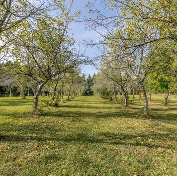 Residential Freehold 3515 Sideroad 10 N/A Bradford West Gwillimbury For {
  "AboveGradeFinishedArea": 0,
  "AboveGradeFinishedAreaSource": "",
  "AboveGradeFinishedAreaUnits": "",
  "Acreage": "",
  "Active": true,
  "Address": "3515 Sideroad 10 N/A",
  "AirConditioning": "Central Air",
  "AirConditioningYN": false,
  "Amps": "",
  "Appliances": "",
  "ApproxAge": "",
  "ApproxSquareFootage": "1500-2000",
  "Area": "Simcoe",
  "AssessmentYear": "",
  "AssignmentYN": false,
  "AssociationAmenities": "",
  "AssociationFee": "",
  "AssociationFeeIncludes": "",
  "AssociationName": "",
  "AssociationYN": false,
  "Balcony": "",
  "Basement": "Partially Finished, Walk-Out",
  "BasementYN": false,
  "BathroomsFull": 0,
  "BathroomsHalf": 0,
  "Bedrooms": 3,
  "BedroomsDisplay": "3+1",
  "BedroomsPlus": 1,
  "BedroomsTotal": 4,
  "BelowGradeFinishedArea": 0,
  "BelowGradeFinishedAreaSource": "",
  "BelowGradeFinishedAreaUnits": "",
  "Board": "Toronto Regional Real Estate Board",
  "BuilderName": "",
  "BuildingAreaTotal": "",
  "BuildingAreaUnits": "",
  "BuildingName": "",
  "BusinessName": "",
  "BusinessType": "",
  "BuyerAgencyCompensation": "2.5%",
  "BuyerAgencyCompensationType": "",
  "BuyerAgentAOR": "",
  "BuyerAgentEmail": "",
  "BuyerAgentFullName": "",
  "BuyerAgentId": "",
  "BuyerAgentMlsId": "",
  "BuyerAgentPhone": "",
  "BuyerOfficeId": "",
  "BuyerOfficeMlsId": "",
  "BuyerOfficeName": "",
  "BuyerOfficePhone": "",
  "CarportSpaces": 0,
  "Category": "MLS",
  "ChattelsYN": false,
  "City": "Bradford West Gwillimbury",
  "ClassSearch": "Residential",
  "ClosedDate": "0001-01-01T00:00:00",
  "CoListAgentDesignation": "",
  "CoListAgentEmail": "",
  "CoListAgentID": "",
  "CoListAgentMLSID": "",
  "CoListAgentName": "",
  "CoListAgentPhone": "",
  "CoListOfficeID": "248506",
  "CoListOfficeMLSID": "248506",
  "CoListOfficeName": "CENTURY 21 HERITAGE GROUP LTD.",
  "CommercialCondoFee": "",
  "CommercialCondoFeeFrequency": "",
  "CommercialCondoFees": "",
  "Commission": "2.5%",
  "Community": "Bradford",
  "CommunityFeatures": "",
  "Condition": "",
  "ConditionalExpiryDate": "0001-01-01T00:00:00",
  "ConditionOfSale": "",
  "CondoCorpNumber": "",
  "ConsentToAdvertiseYN": true,
  "ConstructionMaterials": "Brick, Stone",
  "ContactAfterExpiryYN": false,
  "ContractDate": "2026-09-23T00:00:00",
  "Cooling": "Central Air",
  "CoolingYN": false,
  "Country": "",
  "CoverPhoto": "https://media.remarketer.ca/PROPTX/N13821630-1.jpg?tr=di-propertynoimage_pj5ksb5iM,f-jpg,q-90",
  "CrossStreet": "Sideroad 10 & Line 10",
  "DaysOnMarket": 0,
  "DepositRequired": "",
  "Directions": "Sideroad 10 & Line 10",
  "Disclosures": "",
  "DisplayAddress": "3515 Sideroad 10 N/A",
  "DisplayAddressYN": true,
  "DistributeToInternetYN": true,
  "Drive": "",
  "Electric": "",
  "ElectricExpense": "",
  "ElectricOnPropertyYN": false,
  "ElectricYN": false,
  "ElementarySchool": "",
  "ElevatorYN": false,
  "Exclusions": "N/A",
  "Expenses": "",
  "ExpiryDate": "2027-01-16T00:00:00",
  "Exposure": "",
  "Exterior": "",
  "ExteriorFeatures": "",
  "Extras": "",
  "FamilyRoom": "",
  "FireplaceTotal": 0,
  "FireplaceYN": true,
  "Flooring": "",
  "FloorPlans": "",
  "FoundationDetails": "Concrete Block",
  "Franchise": "",
  "FranchiseYN": false,
  "FurnishedYN": false,
  "GarageSpaces": 2,
  "GarageType": "Detached",
  "GarageYN": true,
  "GasYN": false,
  "Geometry": {
    "lat": 44.1414,
    "lon": -79.6086
  },
  "GymYN": false,
  "HeatingYN": false,
  "HeatSource": "Oil",
  "HeatType": "Forced Air",
  "HighSchool": "",
  "HoldoverDays": "90",
  "id": "N13821630_PROPTX",
  "IDX": "Y",
  "IDXYN": true,
  "Inclusions": "Compare To Lots In Town, Tons Of Value In This Property. Wonderful Location. Fridge, Washer, Dryer, Built In Dishwasher",
  "InteriorFeatures": "In-Law Capability",
  "Kitchens": 1,
  "KitchensPlus": 0,
  "LandLeaseAmount": "",
  "LandLeaseYN": false,
  "LastStatus": "New",
  "Latitude": 44.1414,
  "LaundryFeatures": "",
  "LaundryLevel": "",
  "Lease": "",
  "LeaseAgreement": "",
  "LeaseAgreementYN": false,
  "LeaseFrequency": "",
  "LeaseTerm": "",
  "LegalDescription": "",
  "Level": "",
  "ListAgentDesignation": "",
  "ListAgentEmail": "",
  "ListAgentID": "9546639",
  "ListAgentMLSID": "9546639",
  "ListAgentName": "PETER FERRAGINE, Salesperson",
  "ListAgentPhone": "",
  "ListAOR": "Toronto Regional Real Estate Board",
  "ListBrokerage": "CENTURY 21 HERITAGE GROUP LTD.",
  "ListingEntryDate": "2026-09-23T23:52:57",
  "ListingId": "N13821630",
  "ListingKey": "N13821630",
  "ListOfficeID": "248506",
  "ListOfficeMLSID": "248506",
  "ListOfficePhone": "",
  "ListPrice": 999999,
  "ListPricePerUnit": 0,
  "ListPriceUnit": "",
  "LivingArea": "1500-2000",
  "LivingAreaSource": "",
  "LivingAreaUnits": "",
  "Locker": "",
  "Longitude": -79.6086,
  "LotDepth": 756.02,
  "LotFeatures": "",
  "LotFront": 275.85,
  "LotIrregularities": "",
  "LotShape": "",
  "LotSizeArea": "",
  "LotSizeAreaUnits": "",
  "LotSizeCode": "Feet",
  "LotSizeDimensions": "",
  "Maintenance": "",
  "Media": [
    {
      "id": "58fdfa9d-71ca-4453-8d9c-cfa61423bfba-nw_PROPTX",
      "ListingId": "N13821630",
      "ListingKey": "N13821630",
      "MediaId": "58fdfa9d-71ca-4453-8d9c-cfa61423bfba-nw",
      "ModificationTimestamp": "2026-09-23T23:52:57",
      "MediaOrder": 1,
      "Active": true,
      "MediaSize": "",
      "ResourceName": "Property",
      "ClassName": "ResidentialFree",
      "MediaDescription": "",
      "PreferredPhotoYN": true,
      "WaterMarkYN": false,
      "MediaName": "",
      "MediaCategory": "Photo",
      "MediaHTML": "",
      "MediaType": "image/jpeg",
      "MediaUrl": "https://trreb-image.ampre.ca/eIUkRtLkTZRSQPp_w6CX8yc_iVpYNDutOD8R4WueE4U/rs:fit:3840:3840/L3RycmViL2xpc3RpbmdzLzQ0LzczLzQxLzkyL3AvNThmZGZhOWQtNzFjYS00NDUzLThkOWMtY2ZhNjE0MjNiZmJhLmpwZw.jpg",
      "MediaWidth": "1200",
      "MediaHeight": "800",
      "MediaStatus": "Active",
      "Source": "PROPTX",
      "OriginatingSystemName": "",
      "RTimestampSql": "2026-09-24T00:05:16.31"
    },
    {
      "id": "59fe1a57-d385-4736-bae9-d089e6be80c7-nw_PROPTX",
      "ListingId": "N13821630",
      "ListingKey": "N13821630",
      "MediaId": "59fe1a57-d385-4736-bae9-d089e6be80c7-nw",
      "ModificationTimestamp": "2026-09-23T23:52:57",
      "MediaOrder": 2,
      "Active": true,
      "MediaSize": "",
      "ResourceName": "Property",
      "ClassName": "ResidentialFree",
      "MediaDescription": "",
      "PreferredPhotoYN": false,
      "WaterMarkYN": false,
      "MediaName": "",
      "MediaCategory": "Photo",
      "MediaHTML": "",
      "MediaType": "image/jpeg",
      "MediaUrl": "https://trreb-image.ampre.ca/jI6A6cXbm4Xtjjf2Tq7g48RVPV6RlHc0Nn_AxVzsqcQ/rs:fit:3840:3840/L3RycmViL2xpc3RpbmdzLzQ0LzczLzQxLzkyL3AvNTlmZTFhNTctZDM4NS00NzM2LWJhZTktZDA4OWU2YmU4MGM3LmpwZw.jpg",
      "MediaWidth": "1200",
      "MediaHeight": "800",
      "MediaStatus": "Active",
      "Source": "PROPTX",
      "OriginatingSystemName": "",
      "RTimestampSql": "2026-09-24T00:05:16.343"
    },
    {
      "id": "beae29e6-130b-4529-aba0-07351f6100c6-nw_PROPTX",
      "ListingId": "N13821630",
      "ListingKey": "N13821630",
      "MediaId": "beae29e6-130b-4529-aba0-07351f6100c6-nw",
      "ModificationTimestamp": "2026-09-23T23:52:57",
      "MediaOrder": 3,
      "Active": true,
      "MediaSize": "",
      "ResourceName": "Property",
      "ClassName": "ResidentialFree",
      "MediaDescription": "",
      "PreferredPhotoYN": false,
      "WaterMarkYN": false,
      "MediaName": "",
      "MediaCategory": "Photo",
      "MediaHTML": "",
      "MediaType": "image/jpeg",
      "MediaUrl": "https://trreb-image.ampre.ca/QEghrMmXYi1bPQ-0sQ3DfMzRS7-qnU3I5vYQrCZ0TKU/rs:fit:3840:3840/L3RycmViL2xpc3RpbmdzLzQ0LzczLzQxLzkyL3AvYmVhZTI5ZTYtMTMwYi00NTI5LWFiYTAtMDczNTFmNjEwMGM2LmpwZw.jpg",
      "MediaWidth": "1200",
      "MediaHeight": "800",
      "MediaStatus": "Active",
      "Source": "PROPTX",
      "OriginatingSystemName": "",
      "RTimestampSql": "2026-09-24T00:05:16.767"
    },
    {
      "id": "774d0960-775f-42c0-b369-a3895ce8831b-nw_PROPTX",
      "ListingId": "N13821630",
      "ListingKey": "N13821630",
      "MediaId": "774d0960-775f-42c0-b369-a3895ce8831b-nw",
      "ModificationTimestamp": "2026-09-23T23:52:57",
      "MediaOrder": 4,
      "Active": true,
      "MediaSize": "",
      "ResourceName": "Property",
      "ClassName": "ResidentialFree",
      "MediaDescription": "",
      "PreferredPhotoYN": false,
      "WaterMarkYN": false,
      "MediaName": "",
      "MediaCategory": "Photo",
      "MediaHTML": "",
      "MediaType": "image/jpeg",
      "MediaUrl": "https://trreb-image.ampre.ca/rg4BwsrGLEnGchJ4gvTzyMUaxVSEGWGMC7u_G_uQVjw/rs:fit:3840:3840/L3RycmViL2xpc3RpbmdzLzQ0LzczLzQxLzkyL3AvNzc0ZDA5NjAtNzc1Zi00MmMwLWIzNjktYTM4OTVjZTg4MzFiLmpwZw.jpg",
      "MediaWidth": "1200",
      "MediaHeight": "800",
      "MediaStatus": "Active",
      "Source": "PROPTX",
      "OriginatingSystemName": "",
      "RTimestampSql": "2026-09-24T00:05:16.397"
    },
    {
      "id": "1f7c0676-d657-4c8f-9b27-9f98981c5a38-nw_PROPTX",
      "ListingId": "N13821630",
      "ListingKey": "N13821630",
      "MediaId": "1f7c0676-d657-4c8f-9b27-9f98981c5a38-nw",
      "ModificationTimestamp": "2026-09-23T23:52:57",
      "MediaOrder": 5,
      "Active": true,
      "MediaSize": "",
      "ResourceName": "Property",
      "ClassName": "ResidentialFree",
      "MediaDescription": "",
      "PreferredPhotoYN": false,
      "WaterMarkYN": false,
      "MediaName": "",
      "MediaCategory": "Photo",
      "MediaHTML": "",
      "MediaType": "image/jpeg",
      "MediaUrl": "https://trreb-image.ampre.ca/bNS4_jUsrVzh_hJ-J3N5rCvgID3BL3k5WB0XVSuzOTw/rs:fit:3840:3840/L3RycmViL2xpc3RpbmdzLzQ0LzczLzQxLzkyL3AvMWY3YzA2NzYtZDY1Ny00YzhmLTliMjctOWY5ODk4MWM1YTM4LmpwZw.jpg",
      "MediaWidth": "1200",
      "MediaHeight": "800",
      "MediaStatus": "Active",
      "Source": "PROPTX",
      "OriginatingSystemName": "",
      "RTimestampSql": "2026-09-24T00:05:16.143"
    },
    {
      "id": "7f395855-ebb3-49e7-9f5c-d38b86420b70-nw_PROPTX",
      "ListingId": "N13821630",
      "ListingKey": "N13821630",
      "MediaId": "7f395855-ebb3-49e7-9f5c-d38b86420b70-nw",
      "ModificationTimestamp": "2026-09-23T23:52:57",
      "MediaOrder": 6,
      "Active": true,
      "MediaSize": "",
      "ResourceName": "Property",
      "ClassName": "ResidentialFree",
      "MediaDescription": "",
      "PreferredPhotoYN": false,
      "WaterMarkYN": false,
      "MediaName": "",
      "MediaCategory": "Photo",
      "MediaHTML": "",
      "MediaType": "image/jpeg",
      "MediaUrl": "https://trreb-image.ampre.ca/9VOWjV0-fj9WJvBTzWODSPJb8KK7XR65Z1l1JlqatRI/rs:fit:3840:3840/L3RycmViL2xpc3RpbmdzLzQ0LzczLzQxLzkyL3AvN2YzOTU4NTUtZWJiMy00OWU3LTlmNWMtZDM4Yjg2NDIwYjcwLmpwZw.jpg",
      "MediaWidth": "1200",
      "MediaHeight": "800",
      "MediaStatus": "Active",
      "Source": "PROPTX",
      "OriginatingSystemName": "",
      "RTimestampSql": "2026-09-24T00:05:16.417"
    },
    {
      "id": "151b4017-d2ab-459a-93aa-0e4736acef39-nw_PROPTX",
      "ListingId": "N13821630",
      "ListingKey": "N13821630",
      "MediaId": "151b4017-d2ab-459a-93aa-0e4736acef39-nw",
      "ModificationTimestamp": "2026-09-23T23:52:57",
      "MediaOrder": 7,
      "Active": true,
      "MediaSize": "",
      "ResourceName": "Property",
      "ClassName": "ResidentialFree",
      "MediaDescription": "",
      "PreferredPhotoYN": false,
      "WaterMarkYN": false,
      "MediaName": "",
      "MediaCategory": "Photo",
      "MediaHTML": "",
      "MediaType": "image/jpeg",
      "MediaUrl": "https://trreb-image.ampre.ca/OHjV5F6-NBo58Oqi2RUFbGXwA8A8c8eHPpHvHRr39qk/rs:fit:3840:3840/L3RycmViL2xpc3RpbmdzLzQ0LzczLzQxLzkyL3AvMTUxYjQwMTctZDJhYi00NTlhLTkzYWEtMGU0NzM2YWNlZjM5LmpwZw.jpg",
      "MediaWidth": "1200",
      "MediaHeight": "800",
      "MediaStatus": "Active",
      "Source": "PROPTX",
      "OriginatingSystemName": "",
      "RTimestampSql": "2026-09-24T00:05:16.04"
    },
    {
      "id": "ab116071-3025-441e-b1e8-4f2891513d85-nw_PROPTX",
      "ListingId": "N13821630",
      "ListingKey": "N13821630",
      "MediaId": "ab116071-3025-441e-b1e8-4f2891513d85-nw",
      "ModificationTimestamp": "2026-09-23T23:52:57",
      "MediaOrder": 8,
      "Active": true,
      "MediaSize": "",
      "ResourceName": "Property",
      "ClassName": "ResidentialFree",
      "MediaDescription": "",
      "PreferredPhotoYN": false,
      "WaterMarkYN": false,
      "MediaName": "",
      "MediaCategory": "Photo",
      "MediaHTML": "",
      "MediaType": "image/jpeg",
      "MediaUrl": "https://trreb-image.ampre.ca/l-P91hqdP0M_PtqPiWy6ucJ6J9b4aKw4azjRtU3Ko_o/rs:fit:3840:3840/L3RycmViL2xpc3RpbmdzLzQ0LzczLzQxLzkyL3AvYWIxMTYwNzEtMzAyNS00NDFlLWIxZTgtNGYyODkxNTEzZDg1LmpwZw.jpg",
      "MediaWidth": "1200",
      "MediaHeight": "800",
      "MediaStatus": "Active",
      "Source": "PROPTX",
      "OriginatingSystemName": "",
      "RTimestampSql": "2026-09-24T00:05:16.7"
    },
    {
      "id": "fc96f80f-d4c6-4edf-99f5-45ec09a0789e-nw_PROPTX",
      "ListingId": "N13821630",
      "ListingKey": "N13821630",
      "MediaId": "fc96f80f-d4c6-4edf-99f5-45ec09a0789e-nw",
      "ModificationTimestamp": "2026-09-23T23:52:57",
      "MediaOrder": 9,
      "Active": true,
      "MediaSize": "",
      "ResourceName": "Property",
      "ClassName": "ResidentialFree",
      "MediaDescription": "",
      "PreferredPhotoYN": false,
      "WaterMarkYN": false,
      "MediaName": "",
      "MediaCategory": "Photo",
      "MediaHTML": "",
      "MediaType": "image/jpeg",
      "MediaUrl": "https://trreb-image.ampre.ca/cPxNc1SWxX1VB5hSbQCaWw2jFzKGpfOOtVFYQRp5MQ0/rs:fit:3840:3840/L3RycmViL2xpc3RpbmdzLzQ0LzczLzQxLzkyL3AvZmM5NmY4MGYtZDRjNi00ZWRmLTk5ZjUtNDVlYzA5YTA3ODllLmpwZw.jpg",
      "MediaWidth": "1200",
      "MediaHeight": "800",
      "MediaStatus": "Active",
      "Source": "PROPTX",
      "OriginatingSystemName": "",
      "RTimestampSql": "2026-09-24T00:05:16.967"
    },
    {
      "id": "8ec7cb76-cde4-42e3-ab7a-40ba4f941471-nw_PROPTX",
      "ListingId": "N13821630",
      "ListingKey": "N13821630",
      "MediaId": "8ec7cb76-cde4-42e3-ab7a-40ba4f941471-nw",
      "ModificationTimestamp": "2026-09-23T23:52:57",
      "MediaOrder": 10,
      "Active": true,
      "MediaSize": "",
      "ResourceName": "Property",
      "ClassName": "ResidentialFree",
      "MediaDescription": "",
      "PreferredPhotoYN": false,
      "WaterMarkYN": false,
      "MediaName": "",
      "MediaCategory": "Photo",
      "MediaHTML": "",
      "MediaType": "image/jpeg",
      "MediaUrl": "https://trreb-image.ampre.ca/WzZd-2LIgfYcybn_LBXhmaWOE5V32DBpFJyRy7716gs/rs:fit:3840:3840/L3RycmViL2xpc3RpbmdzLzQ0LzczLzQxLzkyL3AvOGVjN2NiNzYtY2RlNC00MmUzLWFiN2EtNDBiYTRmOTQxNDcxLmpwZw.jpg",
      "MediaWidth": "1200",
      "MediaHeight": "800",
      "MediaStatus": "Active",
      "Source": "PROPTX",
      "OriginatingSystemName": "",
      "RTimestampSql": "2026-09-24T00:05:16.553"
    },
    {
      "id": "f4485bb9-295a-4b28-ac47-a69857cfe4fe-nw_PROPTX",
      "ListingId": "N13821630",
      "ListingKey": "N13821630",
      "MediaId": "f4485bb9-295a-4b28-ac47-a69857cfe4fe-nw",
      "ModificationTimestamp": "2026-09-23T23:52:57",
      "MediaOrder": 11,
      "Active": true,
      "MediaSize": "",
      "ResourceName": "Property",
      "ClassName": "ResidentialFree",
      "MediaDescription": "",
      "PreferredPhotoYN": false,
      "WaterMarkYN": false,
      "MediaName": "",
      "MediaCategory": "Photo",
      "MediaHTML": "",
      "MediaType": "image/jpeg",
      "MediaUrl": "https://trreb-image.ampre.ca/DdYmXB5jMtrhDbFubba5BLJs1p5QDdz0aZNhxAeLaN8/rs:fit:3840:3840/L3RycmViL2xpc3RpbmdzLzQ0LzczLzQxLzkyL3AvZjQ0ODViYjktMjk1YS00YjI4LWFjNDctYTY5ODU3Y2ZlNGZlLmpwZw.jpg",
      "MediaWidth": "1200",
      "MediaHeight": "800",
      "MediaStatus": "Active",
      "Source": "PROPTX",
      "OriginatingSystemName": "",
      "RTimestampSql": "2026-09-24T00:05:16.93"
    },
    {
      "id": "0b7e845f-e8a6-43d1-bb58-b55ca50d8db5-nw_PROPTX",
      "ListingId": "N13821630",
      "ListingKey": "N13821630",
      "MediaId": "0b7e845f-e8a6-43d1-bb58-b55ca50d8db5-nw",
      "ModificationTimestamp": "2026-09-23T23:52:57",
      "MediaOrder": 12,
      "Active": true,
      "MediaSize": "",
      "ResourceName": "Property",
      "ClassName": "ResidentialFree",
      "MediaDescription": "",
      "PreferredPhotoYN": false,
      "WaterMarkYN": false,
      "MediaName": "",
      "MediaCategory": "Photo",
      "MediaHTML": "",
      "MediaType": "image/jpeg",
      "MediaUrl": "https://trreb-image.ampre.ca/13IcKlHzKA-sF2vjuDGy_gDfaQMOkG1_v5dqMlc8Q4Y/rs:fit:3840:3840/L3RycmViL2xpc3RpbmdzLzQ0LzczLzQxLzkyL3AvMGI3ZTg0NWYtZThhNi00M2QxLWJiNTgtYjU1Y2E1MGQ4ZGI1LmpwZw.jpg",
      "MediaWidth": "1200",
      "MediaHeight": "800",
      "MediaStatus": "Active",
      "Source": "PROPTX",
      "OriginatingSystemName": "",
      "RTimestampSql": "2026-09-24T00:05:15.977"
    },
    {
      "id": "6e87864e-531f-481b-a5e7-b6e5c988ecb5-nw_PROPTX",
      "ListingId": "N13821630",
      "ListingKey": "N13821630",
      "MediaId": "6e87864e-531f-481b-a5e7-b6e5c988ecb5-nw",
      "ModificationTimestamp": "2026-09-23T23:52:57",
      "MediaOrder": 13,
      "Active": true,
      "MediaSize": "",
      "ResourceName": "Property",
      "ClassName": "ResidentialFree",
      "MediaDescription": "",
      "PreferredPhotoYN": false,
      "WaterMarkYN": false,
      "MediaName": "",
      "MediaCategory": "Photo",
      "MediaHTML": "",
      "MediaType": "image/jpeg",
      "MediaUrl": "https://trreb-image.ampre.ca/kSQ4CqOJIZWR-QeBOYSh4QyhyP1te0HqxL87klR-jIw/rs:fit:3840:3840/L3RycmViL2xpc3RpbmdzLzQ0LzczLzQxLzkyL3AvNmU4Nzg2NGUtNTMxZi00ODFiLWE1ZTctYjZlNWM5ODhlY2I1LmpwZw.jpg",
      "MediaWidth": "1200",
      "MediaHeight": "800",
      "MediaStatus": "Active",
      "Source": "PROPTX",
      "OriginatingSystemName": "",
      "RTimestampSql": "2026-09-24T00:05:16.38"
    },
    {
      "id": "b0d62cc1-a40c-48ce-b75d-86c346c0748a-nw_PROPTX",
      "ListingId": "N13821630",
      "ListingKey": "N13821630",
      "MediaId": "b0d62cc1-a40c-48ce-b75d-86c346c0748a-nw",
      "ModificationTimestamp": "2026-09-23T23:52:57",
      "MediaOrder": 14,
      "Active": true,
      "MediaSize": "",
      "ResourceName": "Property",
      "ClassName": "ResidentialFree",
      "MediaDescription": "",
      "PreferredPhotoYN": false,
      "WaterMarkYN": false,
      "MediaName": "",
      "MediaCategory": "Photo",
      "MediaHTML": "",
      "MediaType": "image/jpeg",
      "MediaUrl": "https://trreb-image.ampre.ca/qNgbyUygLmzqGyEEfzP8EMQsdn6pFj6ee7uVX0XvLYo/rs:fit:3840:3840/L3RycmViL2xpc3RpbmdzLzQ0LzczLzQxLzkyL3AvYjBkNjJjYzEtYTQwYy00OGNlLWI3NWQtODZjMzQ2YzA3NDhhLmpwZw.jpg",
      "MediaWidth": "1200",
      "MediaHeight": "800",
      "MediaStatus": "Active",
      "Source": "PROPTX",
      "OriginatingSystemName": "",
      "RTimestampSql": "2026-09-24T00:05:16.727"
    },
    {
      "id": "f773a0b5-298d-40df-9b03-e175dc25ef6c-nw_PROPTX",
      "ListingId": "N13821630",
      "ListingKey": "N13821630",
      "MediaId": "f773a0b5-298d-40df-9b03-e175dc25ef6c-nw",
      "ModificationTimestamp": "2026-09-23T23:52:57",
      "MediaOrder": 15,
      "Active": true,
      "MediaSize": "",
      "ResourceName": "Property",
      "ClassName": "ResidentialFree",
      "MediaDescription": "",
      "PreferredPhotoYN": false,
      "WaterMarkYN": false,
      "MediaName": "",
      "MediaCategory": "Photo",
      "MediaHTML": "",
      "MediaType": "image/jpeg",
      "MediaUrl": "https://trreb-image.ampre.ca/aSpIKAK5P33oAlLwaKjiz37yoCLOtFor6so_5jwmYD8/rs:fit:3840:3840/L3RycmViL2xpc3RpbmdzLzQ0LzczLzQxLzkyL3AvZjc3M2EwYjUtMjk4ZC00MGRmLTliMDMtZTE3NWRjMjVlZjZjLmpwZw.jpg",
      "MediaWidth": "1200",
      "MediaHeight": "800",
      "MediaStatus": "Active",
      "Source": "PROPTX",
      "OriginatingSystemName": "",
      "RTimestampSql": "2026-09-24T00:05:16.95"
    },
    {
      "id": "245697d4-0a64-41cf-8ab7-8018ef8705f6-nw_PROPTX",
      "ListingId": "N13821630",
      "ListingKey": "N13821630",
      "MediaId": "245697d4-0a64-41cf-8ab7-8018ef8705f6-nw",
      "ModificationTimestamp": "2026-09-23T23:52:57",
      "MediaOrder": 16,
      "Active": true,
      "MediaSize": "",
      "ResourceName": "Property",
      "ClassName": "ResidentialFree",
      "MediaDescription": "",
      "PreferredPhotoYN": false,
      "WaterMarkYN": false,
      "MediaName": "",
      "MediaCategory": "Photo",
      "MediaHTML": "",
      "MediaType": "image/jpeg",
      "MediaUrl": "https://trreb-image.ampre.ca/oIObEf5MSCX0TPSTL8jLWk-3h7DFj2ShBbdCtpRVXlE/rs:fit:3840:3840/L3RycmViL2xpc3RpbmdzLzQ0LzczLzQxLzkyL3AvMjQ1Njk3ZDQtMGE2NC00MWNmLThhYjctODAxOGVmODcwNWY2LmpwZw.jpg",
      "MediaWidth": "1200",
      "MediaHeight": "800",
      "MediaStatus": "Active",
      "Source": "PROPTX",
      "OriginatingSystemName": "",
      "RTimestampSql": "2026-09-24T00:05:16.17"
    },
    {
      "id": "3cc5d4fb-7075-422a-ac7c-2dc03ccb8b31-nw_PROPTX",
      "ListingId": "N13821630",
      "ListingKey": "N13821630",
      "MediaId": "3cc5d4fb-7075-422a-ac7c-2dc03ccb8b31-nw",
      "ModificationTimestamp": "2026-09-23T23:52:57",
      "MediaOrder": 17,
      "Active": true,
      "MediaSize": "",
      "ResourceName": "Property",
      "ClassName": "ResidentialFree",
      "MediaDescription": "",
      "PreferredPhotoYN": false,
      "WaterMarkYN": false,
      "MediaName": "",
      "MediaCategory": "Photo",
      "MediaHTML": "",
      "MediaType": "image/jpeg",
      "MediaUrl": "https://trreb-image.ampre.ca/qriWh2N1gdS_o6hkg-wPMHjzY3Fooibb87fz6pJhKEo/rs:fit:3840:3840/L3RycmViL2xpc3RpbmdzLzQ0LzczLzQxLzkyL3AvM2NjNWQ0ZmItNzA3NS00MjJhLWFjN2MtMmRjMDNjY2I4YjMxLmpwZw.jpg",
      "MediaWidth": "1200",
      "MediaHeight": "800",
      "MediaStatus": "Active",
      "Source": "PROPTX",
      "OriginatingSystemName": "",
      "RTimestampSql": "2026-09-24T00:05:16.23"
    },
    {
      "id": "8c3af677-a90c-4d83-9773-4d62b66329d9-nw_PROPTX",
      "ListingId": "N13821630",
      "ListingKey": "N13821630",
      "MediaId": "8c3af677-a90c-4d83-9773-4d62b66329d9-nw",
      "ModificationTimestamp": "2026-09-23T23:52:57",
      "MediaOrder": 18,
      "Active": true,
      "MediaSize": "",
      "ResourceName": "Property",
      "ClassName": "ResidentialFree",
      "MediaDescription": "",
      "PreferredPhotoYN": false,
      "WaterMarkYN": false,
      "MediaName": "",
      "MediaCategory": "Photo",
      "MediaHTML": "",
      "MediaType": "image/jpeg",
      "MediaUrl": "https://trreb-image.ampre.ca/xDdOlPO2kwLKQWcKCq3NbjA3bMKzpyWfV1tUMMOWs-4/rs:fit:3840:3840/L3RycmViL2xpc3RpbmdzLzQ0LzczLzQxLzkyL3AvOGMzYWY2NzctYTkwYy00ZDgzLTk3NzMtNGQ2MmI2NjMyOWQ5LmpwZw.jpg",
      "MediaWidth": "1200",
      "MediaHeight": "800",
      "MediaStatus": "Active",
      "Source": "PROPTX",
      "OriginatingSystemName": "",
      "RTimestampSql": "2026-09-24T00:05:16.533"
    },
    {
      "id": "15cb4b51-481d-4d71-9a18-e52a1b670e46-nw_PROPTX",
      "ListingId": "N13821630",
      "ListingKey": "N13821630",
      "MediaId": "15cb4b51-481d-4d71-9a18-e52a1b670e46-nw",
      "ModificationTimestamp": "2026-09-23T23:52:57",
      "MediaOrder": 19,
      "Active": true,
      "MediaSize": "",
      "ResourceName": "Property",
      "ClassName": "ResidentialFree",
      "MediaDescription": "",
      "PreferredPhotoYN": false,
      "WaterMarkYN": false,
      "MediaName": "",
      "MediaCategory": "Photo",
      "MediaHTML": "",
      "MediaType": "image/jpeg",
      "MediaUrl": "https://trreb-image.ampre.ca/R_F5eDzF3STr3CPKUfFj0S9Rzk7nMB8vW5osmw_Lv-k/rs:fit:3840:3840/L3RycmViL2xpc3RpbmdzLzQ0LzczLzQxLzkyL3AvMTVjYjRiNTEtNDgxZC00ZDcxLTlhMTgtZTUyYTFiNjcwZTQ2LmpwZw.jpg",
      "MediaWidth": "1200",
      "MediaHeight": "800",
      "MediaStatus": "Active",
      "Source": "PROPTX",
      "OriginatingSystemName": "",
      "RTimestampSql": "2026-09-24T00:05:16.057"
    },
    {
      "id": "d0ffe1be-61b1-4eec-8896-184662cefd4d-nw_PROPTX",
      "ListingId": "N13821630",
      "ListingKey": "N13821630",
      "MediaId": "d0ffe1be-61b1-4eec-8896-184662cefd4d-nw",
      "ModificationTimestamp": "2026-09-23T23:52:57",
      "MediaOrder": 20,
      "Active": true,
      "MediaSize": "",
      "ResourceName": "Property",
      "ClassName": "ResidentialFree",
      "MediaDescription": "",
      "PreferredPhotoYN": false,
      "WaterMarkYN": false,
      "MediaName": "",
      "MediaCategory": "Photo",
      "MediaHTML": "",
      "MediaType": "image/jpeg",
      "MediaUrl": "https://trreb-image.ampre.ca/HMrHwdPMJXZvexpVHlFHADaQdYibi8DmkdyIeAkeYZo/rs:fit:3840:3840/L3RycmViL2xpc3RpbmdzLzQ0LzczLzQxLzkyL3AvZDBmZmUxYmUtNjFiMS00ZWVjLTg4OTYtMTg0NjYyY2VmZDRkLmpwZw.jpg",
      "MediaWidth": "1200",
      "MediaHeight": "800",
      "MediaStatus": "Active",
      "Source": "PROPTX",
      "OriginatingSystemName": "",
      "RTimestampSql": "2026-09-24T00:05:16.82"
    },
    {
      "id": "d46dcc8c-5df7-41e0-85e7-cc613d34a695-nw_PROPTX",
      "ListingId": "N13821630",
      "ListingKey": "N13821630",
      "MediaId": "d46dcc8c-5df7-41e0-85e7-cc613d34a695-nw",
      "ModificationTimestamp": "2026-09-23T23:52:57",
      "MediaOrder": 21,
      "Active": true,
      "MediaSize": "",
      "ResourceName": "Property",
      "ClassName": "ResidentialFree",
      "MediaDescription": "",
      "PreferredPhotoYN": false,
      "WaterMarkYN": false,
      "MediaName": "",
      "MediaCategory": "Photo",
      "MediaHTML": "",
      "MediaType": "image/jpeg",
      "MediaUrl": "https://trreb-image.ampre.ca/EH5o5vzTcX1jQe47CfFFoqPMyprTSdfz_sAbjx9oSPI/rs:fit:3840:3840/L3RycmViL2xpc3RpbmdzLzQ0LzczLzQxLzkyL3AvZDQ2ZGNjOGMtNWRmNy00MWUwLTg1ZTctY2M2MTNkMzRhNjk1LmpwZw.jpg",
      "MediaWidth": "1200",
      "MediaHeight": "800",
      "MediaStatus": "Active",
      "Source": "PROPTX",
      "OriginatingSystemName": "",
      "RTimestampSql": "2026-09-24T00:05:16.84"
    },
    {
      "id": "e6f65eea-5fc8-4cae-a5cf-58ca9d0abea6-nw_PROPTX",
      "ListingId": "N13821630",
      "ListingKey": "N13821630",
      "MediaId": "e6f65eea-5fc8-4cae-a5cf-58ca9d0abea6-nw",
      "ModificationTimestamp": "2026-09-23T23:52:57",
      "MediaOrder": 22,
      "Active": true,
      "MediaSize": "",
      "ResourceName": "Property",
      "ClassName": "ResidentialFree",
      "MediaDescription": "",
      "PreferredPhotoYN": false,
      "WaterMarkYN": false,
      "MediaName": "",
      "MediaCategory": "Photo",
      "MediaHTML": "",
      "MediaType": "image/jpeg",
      "MediaUrl": "https://trreb-image.ampre.ca/Z0d2GCMO_ro8VTgmQoq1Lwan7uR_Km48QsgAnoL6bcE/rs:fit:3840:3840/L3RycmViL2xpc3RpbmdzLzQ0LzczLzQxLzkyL3AvZTZmNjVlZWEtNWZjOC00Y2FlLWE1Y2YtNThjYTlkMGFiZWE2LmpwZw.jpg",
      "MediaWidth": "1200",
      "MediaHeight": "800",
      "MediaStatus": "Active",
      "Source": "PROPTX",
      "OriginatingSystemName": "",
      "RTimestampSql": "2026-09-24T00:05:16.887"
    },
    {
      "id": "4ebd3b76-92b4-49de-94c1-f230ab405e6d-nw_PROPTX",
      "ListingId": "N13821630",
      "ListingKey": "N13821630",
      "MediaId": "4ebd3b76-92b4-49de-94c1-f230ab405e6d-nw",
      "ModificationTimestamp": "2026-09-23T23:52:57",
      "MediaOrder": 23,
      "Active": true,
      "MediaSize": "",
      "ResourceName": "Property",
      "ClassName": "ResidentialFree",
      "MediaDescription": "",
      "PreferredPhotoYN": false,
      "WaterMarkYN": false,
      "MediaName": "",
      "MediaCategory": "Photo",
      "MediaHTML": "",
      "MediaType": "image/jpeg",
      "MediaUrl": "https://trreb-image.ampre.ca/oePAXKl1Fs-62g_1T4uOmxePXV9oqWxFnrABPs9bWeU/rs:fit:3840:3840/L3RycmViL2xpc3RpbmdzLzQ0LzczLzQxLzkyL3AvNGViZDNiNzYtOTJiNC00OWRlLTk0YzEtZjIzMGFiNDA1ZTZkLmpwZw.jpg",
      "MediaWidth": "1200",
      "MediaHeight": "800",
      "MediaStatus": "Active",
      "Source": "PROPTX",
      "OriginatingSystemName": "",
      "RTimestampSql": "2026-09-24T00:05:16.273"
    },
    {
      "id": "4a6655e5-5a99-430b-b7ae-52c4b9cdfabe-nw_PROPTX",
      "ListingId": "N13821630",
      "ListingKey": "N13821630",
      "MediaId": "4a6655e5-5a99-430b-b7ae-52c4b9cdfabe-nw",
      "ModificationTimestamp": "2026-09-23T23:52:57",
      "MediaOrder": 24,
      "Active": true,
      "MediaSize": "",
      "ResourceName": "Property",
      "ClassName": "ResidentialFree",
      "MediaDescription": "",
      "PreferredPhotoYN": false,
      "WaterMarkYN": false,
      "MediaName": "",
      "MediaCategory": "Photo",
      "MediaHTML": "",
      "MediaType": "image/jpeg",
      "MediaUrl": "https://trreb-image.ampre.ca/sbHgqtfLQ2aSLePfQd69nl2Whw0ZnBJICfXMcHepsRE/rs:fit:3840:3840/L3RycmViL2xpc3RpbmdzLzQ0LzczLzQxLzkyL3AvNGE2NjU1ZTUtNWE5OS00MzBiLWI3YWUtNTJjNGI5Y2RmYWJlLmpwZw.jpg",
      "MediaWidth": "1200",
      "MediaHeight": "800",
      "MediaStatus": "Active",
      "Source": "PROPTX",
      "OriginatingSystemName": "",
      "RTimestampSql": "2026-09-24T00:05:16.257"
    },
    {
      "id": "236ee443-e3c7-407f-97f9-2c7f6bce5467-nw_PROPTX",
      "ListingId": "N13821630",
      "ListingKey": "N13821630",
      "MediaId": "236ee443-e3c7-407f-97f9-2c7f6bce5467-nw",
      "ModificationTimestamp": "2026-09-23T23:52:57",
      "MediaOrder": 25,
      "Active": true,
      "MediaSize": "",
      "ResourceName": "Property",
      "ClassName": "ResidentialFree",
      "MediaDescription": "",
      "PreferredPhotoYN": false,
      "WaterMarkYN": false,
      "MediaName": "",
      "MediaCategory": "Photo",
      "MediaHTML": "",
      "MediaType": "image/jpeg",
      "MediaUrl": "https://trreb-image.ampre.ca/d_CLEVfQLVUmh4ZYQGtE4wgylDyaR_9nFCfKIrIOj4Y/rs:fit:3840:3840/L3RycmViL2xpc3RpbmdzLzQ0LzczLzQxLzkyL3AvMjM2ZWU0NDMtZTNjNy00MDdmLTk3ZjktMmM3ZjZiY2U1NDY3LmpwZw.jpg",
      "MediaWidth": "1200",
      "MediaHeight": "800",
      "MediaStatus": "Active",
      "Source": "PROPTX",
      "OriginatingSystemName": "",
      "RTimestampSql": "2026-09-24T00:05:16.16"
    },
    {
      "id": "13b2abe2-acca-46da-bf48-3ba883bcdde6-nw_PROPTX",
      "ListingId": "N13821630",
      "ListingKey": "N13821630",
      "MediaId": "13b2abe2-acca-46da-bf48-3ba883bcdde6-nw",
      "ModificationTimestamp": "2026-09-23T23:52:57",
      "MediaOrder": 26,
      "Active": true,
      "MediaSize": "",
      "ResourceName": "Property",
      "ClassName": "ResidentialFree",
      "MediaDescription": "",
      "PreferredPhotoYN": false,
      "WaterMarkYN": false,
      "MediaName": "",
      "MediaCategory": "Photo",
      "MediaHTML": "",
      "MediaType": "image/jpeg",
      "MediaUrl": "https://trreb-image.ampre.ca/5X80QsVeHsGHb7bu35DGQG41A3lRdtl36yI3PnPvJKc/rs:fit:3840:3840/L3RycmViL2xpc3RpbmdzLzQ0LzczLzQxLzkyL3AvMTNiMmFiZTItYWNjYS00NmRhLWJmNDgtM2JhODgzYmNkZGU2LmpwZw.jpg",
      "MediaWidth": "1200",
      "MediaHeight": "800",
      "MediaStatus": "Active",
      "Source": "PROPTX",
      "OriginatingSystemName": "",
      "RTimestampSql": "2026-09-24T00:05:16.023"
    },
    {
      "id": "87e5a399-b43c-4f0c-8842-7fe7b698a290-nw_PROPTX",
      "ListingId": "N13821630",
      "ListingKey": "N13821630",
      "MediaId": "87e5a399-b43c-4f0c-8842-7fe7b698a290-nw",
      "ModificationTimestamp": "2026-09-23T23:52:57",
      "MediaOrder": 27,
      "Active": true,
      "MediaSize": "",
      "ResourceName": "Property",
      "ClassName": "ResidentialFree",
      "MediaDescription": "",
      "PreferredPhotoYN": false,
      "WaterMarkYN": false,
      "MediaName": "",
      "MediaCategory": "Photo",
      "MediaHTML": "",
      "MediaType": "image/jpeg",
      "MediaUrl": "https://trreb-image.ampre.ca/68TdcZpddXIDj70hWV1eJHlIG5umR1rik881YIJZKh0/rs:fit:3840:3840/L3RycmViL2xpc3RpbmdzLzQ0LzczLzQxLzkyL3AvODdlNWEzOTktYjQzYy00ZjBjLTg4NDItN2ZlN2I2OThhMjkwLmpwZw.jpg",
      "MediaWidth": "1200",
      "MediaHeight": "800",
      "MediaStatus": "Active",
      "Source": "PROPTX",
      "OriginatingSystemName": "",
      "RTimestampSql": "2026-09-24T00:05:16.52"
    },
    {
      "id": "e0323f5d-8db8-47b1-bbda-ffc72775aede-nw_PROPTX",
      "ListingId": "N13821630",
      "ListingKey": "N13821630",
      "MediaId": "e0323f5d-8db8-47b1-bbda-ffc72775aede-nw",
      "ModificationTimestamp": "2026-09-23T23:52:57",
      "MediaOrder": 28,
      "Active": true,
      "MediaSize": "",
      "ResourceName": "Property",
      "ClassName": "ResidentialFree",
      "MediaDescription": "",
      "PreferredPhotoYN": false,
      "WaterMarkYN": false,
      "MediaName": "",
      "MediaCategory": "Photo",
      "MediaHTML": "",
      "MediaType": "image/jpeg",
      "MediaUrl": "https://trreb-image.ampre.ca/spel-mlUzeuLGZC1tHBkDbGa4LHsYL66fCkzPkoG3Aw/rs:fit:3840:3840/L3RycmViL2xpc3RpbmdzLzQ0LzczLzQxLzkyL3AvZTAzMjNmNWQtOGRiOC00N2IxLWJiZGEtZmZjNzI3NzVhZWRlLmpwZw.jpg",
      "MediaWidth": "1200",
      "MediaHeight": "800",
      "MediaStatus": "Active",
      "Source": "PROPTX",
      "OriginatingSystemName": "",
      "RTimestampSql": "2026-09-24T00:05:16.863"
    },
    {
      "id": "5d05cae7-9750-4dc6-b9ac-b1f41019439f-nw_PROPTX",
      "ListingId": "N13821630",
      "ListingKey": "N13821630",
      "MediaId": "5d05cae7-9750-4dc6-b9ac-b1f41019439f-nw",
      "ModificationTimestamp": "2026-09-23T23:52:57",
      "MediaOrder": 29,
      "Active": true,
      "MediaSize": "",
      "ResourceName": "Property",
      "ClassName": "ResidentialFree",
      "MediaDescription": "",
      "PreferredPhotoYN": false,
      "WaterMarkYN": false,
      "MediaName": "",
      "MediaCategory": "Photo",
      "MediaHTML": "",
      "MediaType": "image/jpeg",
      "MediaUrl": "https://trreb-image.ampre.ca/7t_pQxh6EZEaBkIkwR5FmJgzTBZ2FcWJq9mlIbIV-xU/rs:fit:3840:3840/L3RycmViL2xpc3RpbmdzLzQ0LzczLzQxLzkyL3AvNWQwNWNhZTctOTc1MC00ZGM2LWI5YWMtYjFmNDEwMTk0MzlmLmpwZw.jpg",
      "MediaWidth": "1200",
      "MediaHeight": "800",
      "MediaStatus": "Active",
      "Source": "PROPTX",
      "OriginatingSystemName": "",
      "RTimestampSql": "2026-09-24T00:05:16.36"
    },
    {
      "id": "c87d5ef2-a949-4aad-9e49-5df34bd5217c-nw_PROPTX",
      "ListingId": "N13821630",
      "ListingKey": "N13821630",
      "MediaId": "c87d5ef2-a949-4aad-9e49-5df34bd5217c-nw",
      "ModificationTimestamp": "2026-09-23T23:52:57",
      "MediaOrder": 30,
      "Active": true,
      "MediaSize": "",
      "ResourceName": "Property",
      "ClassName": "ResidentialFree",
      "MediaDescription": "",
      "PreferredPhotoYN": false,
      "WaterMarkYN": false,
      "MediaName": "",
      "MediaCategory": "Photo",
      "MediaHTML": "",
      "MediaType": "image/jpeg",
      "MediaUrl": "https://trreb-image.ampre.ca/GiIkTsn2t_zic8rL2WueUhmo8WfriV2xq4h_jrWDjLQ/rs:fit:3840:3840/L3RycmViL2xpc3RpbmdzLzQ0LzczLzQxLzkyL3AvYzg3ZDVlZjItYTk0OS00YWFkLTllNDktNWRmMzRiZDUyMTdjLmpwZw.jpg",
      "MediaWidth": "1200",
      "MediaHeight": "800",
      "MediaStatus": "Active",
      "Source": "PROPTX",
      "OriginatingSystemName": "",
      "RTimestampSql": "2026-09-24T00:05:16.79"
    },
    {
      "id": "43c4fe2b-e909-48e0-98e7-cc6036f1e625-nw_PROPTX",
      "ListingId": "N13821630",
      "ListingKey": "N13821630",
      "MediaId": "43c4fe2b-e909-48e0-98e7-cc6036f1e625-nw",
      "ModificationTimestamp": "2026-09-23T23:52:57",
      "MediaOrder": 31,
      "Active": true,
      "MediaSize": "",
      "ResourceName": "Property",
      "ClassName": "ResidentialFree",
      "MediaDescription": "",
      "PreferredPhotoYN": false,
      "WaterMarkYN": false,
      "MediaName": "",
      "MediaCategory": "Photo",
      "MediaHTML": "",
      "MediaType": "image/jpeg",
      "MediaUrl": "https://trreb-image.ampre.ca/4VxGxVbaBWAkbwnLFUFfB-LMiewIFairVBhp2pMU_0A/rs:fit:3840:3840/L3RycmViL2xpc3RpbmdzLzQ0LzczLzQxLzkyL3AvNDNjNGZlMmItZTkwOS00OGUwLTk4ZTctY2M2MDM2ZjFlNjI1LmpwZw.jpg",
      "MediaWidth": "1200",
      "MediaHeight": "800",
      "MediaStatus": "Active",
      "Source": "PROPTX",
      "OriginatingSystemName": "",
      "RTimestampSql": "2026-09-24T00:05:16.243"
    },
    {
      "id": "a68a47b1-c7f4-420a-ab24-07c7913ca325-nw_PROPTX",
      "ListingId": "N13821630",
      "ListingKey": "N13821630",
      "MediaId": "a68a47b1-c7f4-420a-ab24-07c7913ca325-nw",
      "ModificationTimestamp": "2026-09-23T23:52:57",
      "MediaOrder": 32,
      "Active": true,
      "MediaSize": "",
      "ResourceName": "Property",
      "ClassName": "ResidentialFree",
      "MediaDescription": "",
      "PreferredPhotoYN": false,
      "WaterMarkYN": false,
      "MediaName": "",
      "MediaCategory": "Photo",
      "MediaHTML": "",
      "MediaType": "image/jpeg",
      "MediaUrl": "https://trreb-image.ampre.ca/blypR0HchrE9fXB7hXanTcxhhzN302uMS1GpMhn5PnQ/rs:fit:3840:3840/L3RycmViL2xpc3RpbmdzLzQ0LzczLzQxLzkyL3AvYTY4YTQ3YjEtYzdmNC00MjBhLWFiMjQtMDdjNzkxM2NhMzI1LmpwZw.jpg",
      "MediaWidth": "1200",
      "MediaHeight": "800",
      "MediaStatus": "Active",
      "Source": "PROPTX",
      "OriginatingSystemName": "",
      "RTimestampSql": "2026-09-24T00:05:16.633"
    },
    {
      "id": "3ae4a63f-4c46-4bab-800d-da4d2fbf9f45-nw_PROPTX",
      "ListingId": "N13821630",
      "ListingKey": "N13821630",
      "MediaId": "3ae4a63f-4c46-4bab-800d-da4d2fbf9f45-nw",
      "ModificationTimestamp": "2026-09-23T23:52:57",
      "MediaOrder": 33,
      "Active": true,
      "MediaSize": "",
      "ResourceName": "Property",
      "ClassName": "ResidentialFree",
      "MediaDescription": "",
      "PreferredPhotoYN": false,
      "WaterMarkYN": false,
      "MediaName": "",
      "MediaCategory": "Photo",
      "MediaHTML": "",
      "MediaType": "image/jpeg",
      "MediaUrl": "https://trreb-image.ampre.ca/6CTYC5DbHKT2nMudStuc7HpmnYe7ji6NOKDnQOVIQoo/rs:fit:3840:3840/L3RycmViL2xpc3RpbmdzLzQ0LzczLzQxLzkyL3AvM2FlNGE2M2YtNGM0Ni00YmFiLTgwMGQtZGE0ZDJmYmY5ZjQ1LmpwZw.jpg",
      "MediaWidth": "1200",
      "MediaHeight": "800",
      "MediaStatus": "Active",
      "Source": "PROPTX",
      "OriginatingSystemName": "",
      "RTimestampSql": "2026-09-24T00:05:16.2"
    },
    {
      "id": "9f7a4ba3-02ce-47bb-b5c3-7c59597d23fc-nw_PROPTX",
      "ListingId": "N13821630",
      "ListingKey": "N13821630",
      "MediaId": "9f7a4ba3-02ce-47bb-b5c3-7c59597d23fc-nw",
      "ModificationTimestamp": "2026-09-23T23:52:57",
      "MediaOrder": 34,
      "Active": true,
      "MediaSize": "",
      "ResourceName": "Property",
      "ClassName": "ResidentialFree",
      "MediaDescription": "",
      "PreferredPhotoYN": false,
      "WaterMarkYN": false,
      "MediaName": "",
      "MediaCategory": "Photo",
      "MediaHTML": "",
      "MediaType": "image/jpeg",
      "MediaUrl": "https://trreb-image.ampre.ca/H-_3J0wXK7eoUCyjcqmXZYn7dPEAZgVaXTPYVWyv93Q/rs:fit:3840:3840/L3RycmViL2xpc3RpbmdzLzQ0LzczLzQxLzkyL3AvOWY3YTRiYTMtMDJjZS00N2JiLWI1YzMtN2M1OTU5N2QyM2ZjLmpwZw.jpg",
      "MediaWidth": "1200",
      "MediaHeight": "800",
      "MediaStatus": "Active",
      "Source": "PROPTX",
      "OriginatingSystemName": "",
      "RTimestampSql": "2026-09-24T00:05:16.617"
    },
    {
      "id": "865eb4d9-01a1-4a96-b306-1a2710a9f49e-nw_PROPTX",
      "ListingId": "N13821630",
      "ListingKey": "N13821630",
      "MediaId": "865eb4d9-01a1-4a96-b306-1a2710a9f49e-nw",
      "ModificationTimestamp": "2026-09-23T23:52:57",
      "MediaOrder": 35,
      "Active": true,
      "MediaSize": "",
      "ResourceName": "Property",
      "ClassName": "ResidentialFree",
      "MediaDescription": "",
      "PreferredPhotoYN": false,
      "WaterMarkYN": false,
      "MediaName": "",
      "MediaCategory": "Photo",
      "MediaHTML": "",
      "MediaType": "image/jpeg",
      "MediaUrl": "https://trreb-image.ampre.ca/x1vf3AhYGqiOZTIiEQD6KXcMO71kKIyqH77do944f_Y/rs:fit:3840:3840/L3RycmViL2xpc3RpbmdzLzQ0LzczLzQxLzkyL3AvODY1ZWI0ZDktMDFhMS00YTk2LWIzMDYtMWEyNzEwYTlmNDllLmpwZw.jpg",
      "MediaWidth": "1200",
      "MediaHeight": "800",
      "MediaStatus": "Active",
      "Source": "PROPTX",
      "OriginatingSystemName": "",
      "RTimestampSql": "2026-09-24T00:05:16.503"
    },
    {
      "id": "f380a7dc-c9b9-48dc-bddc-8b9c38e87aa6-nw_PROPTX",
      "ListingId": "N13821630",
      "ListingKey": "N13821630",
      "MediaId": "f380a7dc-c9b9-48dc-bddc-8b9c38e87aa6-nw",
      "ModificationTimestamp": "2026-09-23T23:52:57",
      "MediaOrder": 36,
      "Active": true,
      "MediaSize": "",
      "ResourceName": "Property",
      "ClassName": "ResidentialFree",
      "MediaDescription": "",
      "PreferredPhotoYN": false,
      "WaterMarkYN": false,
      "MediaName": "",
      "MediaCategory": "Photo",
      "MediaHTML": "",
      "MediaType": "image/jpeg",
      "MediaUrl": "https://trreb-image.ampre.ca/BKXLWtlYG_X_szJUBzGjAAy7FzH5FH4ukGvQL5svs7c/rs:fit:3840:3840/L3RycmViL2xpc3RpbmdzLzQ0LzczLzQxLzkyL3AvZjM4MGE3ZGMtYzliOS00OGRjLWJkZGMtOGI5YzM4ZTg3YWE2LmpwZw.jpg",
      "MediaWidth": "1200",
      "MediaHeight": "800",
      "MediaStatus": "Active",
      "Source": "PROPTX",
      "OriginatingSystemName": "",
      "RTimestampSql": "2026-09-24T00:05:16.913"
    },
    {
      "id": "3b8ed897-a6e9-4c39-81d7-554da1f159ab-nw_PROPTX",
      "ListingId": "N13821630",
      "ListingKey": "N13821630",
      "MediaId": "3b8ed897-a6e9-4c39-81d7-554da1f159ab-nw",
      "ModificationTimestamp": "2026-09-23T23:52:57",
      "MediaOrder": 37,
      "Active": true,
      "MediaSize": "",
      "ResourceName": "Property",
      "ClassName": "ResidentialFree",
      "MediaDescription": "",
      "PreferredPhotoYN": false,
      "WaterMarkYN": false,
      "MediaName": "",
      "MediaCategory": "Photo",
      "MediaHTML": "",
      "MediaType": "image/jpeg",
      "MediaUrl": "https://trreb-image.ampre.ca/hetg9NTRz8maHkyjrp79xmG5BVwqvI1A6ymJ5X-jTHU/rs:fit:3840:3840/L3RycmViL2xpc3RpbmdzLzQ0LzczLzQxLzkyL3AvM2I4ZWQ4OTctYTZlOS00YzM5LTgxZDctNTU0ZGExZjE1OWFiLmpwZw.jpg",
      "MediaWidth": "1200",
      "MediaHeight": "674",
      "MediaStatus": "Active",
      "Source": "PROPTX",
      "OriginatingSystemName": "",
      "RTimestampSql": "2026-09-24T00:05:16.21"
    },
    {
      "id": "50088e78-6908-4dab-aaff-e01cbce88d68-nw_PROPTX",
      "ListingId": "N13821630",
      "ListingKey": "N13821630",
      "MediaId": "50088e78-6908-4dab-aaff-e01cbce88d68-nw",
      "ModificationTimestamp": "2026-09-23T23:52:57",
      "MediaOrder": 38,
      "Active": true,
      "MediaSize": "",
      "ResourceName": "Property",
      "ClassName": "ResidentialFree",
      "MediaDescription": "",
      "PreferredPhotoYN": false,
      "WaterMarkYN": false,
      "MediaName": "",
      "MediaCategory": "Photo",
      "MediaHTML": "",
      "MediaType": "image/jpeg",
      "MediaUrl": "https://trreb-image.ampre.ca/-xO53LL36u1nqxgVG2BcIUuw82txAjheEqVeJ9VRjLs/rs:fit:3840:3840/L3RycmViL2xpc3RpbmdzLzQ0LzczLzQxLzkyL3AvNTAwODhlNzgtNjkwOC00ZGFiLWFhZmYtZTAxY2JjZTg4ZDY4LmpwZw.jpg",
      "MediaWidth": "1200",
      "MediaHeight": "674",
      "MediaStatus": "Active",
      "Source": "PROPTX",
      "OriginatingSystemName": "",
      "RTimestampSql": "2026-09-24T00:05:16.29"
    },
    {
      "id": "94c40057-538d-47a2-afb8-1cc0008ded48-nw_PROPTX",
      "ListingId": "N13821630",
      "ListingKey": "N13821630",
      "MediaId": "94c40057-538d-47a2-afb8-1cc0008ded48-nw",
      "ModificationTimestamp": "2026-09-23T23:52:57",
      "MediaOrder": 39,
      "Active": true,
      "MediaSize": "",
      "ResourceName": "Property",
      "ClassName": "ResidentialFree",
      "MediaDescription": "",
      "PreferredPhotoYN": false,
      "WaterMarkYN": false,
      "MediaName": "",
      "MediaCategory": "Photo",
      "MediaHTML": "",
      "MediaType": "image/jpeg",
      "MediaUrl": "https://trreb-image.ampre.ca/-dWw_KCuge08y1yXjLeWL4cfwT-GisLlMa0LZXhU32Y/rs:fit:3840:3840/L3RycmViL2xpc3RpbmdzLzQ0LzczLzQxLzkyL3AvOTRjNDAwNTctNTM4ZC00N2EyLWFmYjgtMWNjMDAwOGRlZDQ4LmpwZw.jpg",
      "MediaWidth": "1200",
      "MediaHeight": "674",
      "MediaStatus": "Active",
      "Source": "PROPTX",
      "OriginatingSystemName": "",
      "RTimestampSql": "2026-09-24T00:05:16.58"
    },
    {
      "id": "01141d53-fc69-49c2-93b6-2a2e15683606-nw_PROPTX",
      "ListingId": "N13821630",
      "ListingKey": "N13821630",
      "MediaId": "01141d53-fc69-49c2-93b6-2a2e15683606-nw",
      "ModificationTimestamp": "2026-09-23T23:52:57",
      "MediaOrder": 40,
      "Active": true,
      "MediaSize": "",
      "ResourceName": "Property",
      "ClassName": "ResidentialFree",
      "MediaDescription": "",
      "PreferredPhotoYN": false,
      "WaterMarkYN": false,
      "MediaName": "",
      "MediaCategory": "Photo",
      "MediaHTML": "",
      "MediaType": "image/jpeg",
      "MediaUrl": "https://trreb-image.ampre.ca/TUUDmNFeQ0oC0W_KrzVfD6TfNKmMJ5y5ni3Kcs_-_lE/rs:fit:3840:3840/L3RycmViL2xpc3RpbmdzLzQ0LzczLzQxLzkyL3AvMDExNDFkNTMtZmM2OS00OWMyLTkzYjYtMmEyZTE1NjgzNjA2LmpwZw.jpg",
      "MediaWidth": "1200",
      "MediaHeight": "674",
      "MediaStatus": "Active",
      "Source": "PROPTX",
      "OriginatingSystemName": "",
      "RTimestampSql": "2026-09-24T00:05:15.95"
    },
    {
      "id": "113e9e01-03a5-44f0-aab5-559f777e46c9-nw_PROPTX",
      "ListingId": "N13821630",
      "ListingKey": "N13821630",
      "MediaId": "113e9e01-03a5-44f0-aab5-559f777e46c9-nw",
      "ModificationTimestamp": "2026-09-23T23:52:57",
      "MediaOrder": 41,
      "Active": true,
      "MediaSize": "",
      "ResourceName": "Property",
      "ClassName": "ResidentialFree",
      "MediaDescription": "",
      "PreferredPhotoYN": false,
      "WaterMarkYN": false,
      "MediaName": "",
      "MediaCategory": "Photo",
      "MediaHTML": "",
      "MediaType": "image/jpeg",
      "MediaUrl": "https://trreb-image.ampre.ca/KBfQ6CdvqHwWoGE6EQHQMBPMz2OG7S54Pp0WAbRjqdE/rs:fit:3840:3840/L3RycmViL2xpc3RpbmdzLzQ0LzczLzQxLzkyL3AvMTEzZTllMDEtMDNhNS00NGYwLWFhYjUtNTU5Zjc3N2U0NmM5LmpwZw.jpg",
      "MediaWidth": "1200",
      "MediaHeight": "674",
      "MediaStatus": "Active",
      "Source": "PROPTX",
      "OriginatingSystemName": "",
      "RTimestampSql": "2026-09-24T00:05:15.993"
    },
    {
      "id": "1c01d799-6def-4ca9-85a0-414d7b6f6591-nw_PROPTX",
      "ListingId": "N13821630",
      "ListingKey": "N13821630",
      "MediaId": "1c01d799-6def-4ca9-85a0-414d7b6f6591-nw",
      "ModificationTimestamp": "2026-09-23T23:52:57",
      "MediaOrder": 42,
      "Active": true,
      "MediaSize": "",
      "ResourceName": "Property",
      "ClassName": "ResidentialFree",
      "MediaDescription": "",
      "PreferredPhotoYN": false,
      "WaterMarkYN": false,
      "MediaName": "",
      "MediaCategory": "Photo",
      "MediaHTML": "",
      "MediaType": "image/jpeg",
      "MediaUrl": "https://trreb-image.ampre.ca/RMSup1cxsrRz9Ln0n1Xg8I4h_lIYbqm9ki9PmEV5n00/rs:fit:3840:3840/L3RycmViL2xpc3RpbmdzLzQ0LzczLzQxLzkyL3AvMWMwMWQ3OTktNmRlZi00Y2E5LTg1YTAtNDE0ZDdiNmY2NTkxLmpwZw.jpg",
      "MediaWidth": "1200",
      "MediaHeight": "674",
      "MediaStatus": "Active",
      "Source": "PROPTX",
      "OriginatingSystemName": "",
      "RTimestampSql": "2026-09-24T00:05:16.12"
    },
    {
      "id": "7fcc211f-a3e6-4f21-97df-57927130ce7b-nw_PROPTX",
      "ListingId": "N13821630",
      "ListingKey": "N13821630",
      "MediaId": "7fcc211f-a3e6-4f21-97df-57927130ce7b-nw",
      "ModificationTimestamp": "2026-09-23T23:52:57",
      "MediaOrder": 43,
      "Active": true,
      "MediaSize": "",
      "ResourceName": "Property",
      "ClassName": "ResidentialFree",
      "MediaDescription": "",
      "PreferredPhotoYN": false,
      "WaterMarkYN": false,
      "MediaName": "",
      "MediaCategory": "Photo",
      "MediaHTML": "",
      "MediaType": "image/jpeg",
      "MediaUrl": "https://trreb-image.ampre.ca/SKhaRIwKXfFCXV2vVo3Bc9Nqfu-d1R25dBocXg7xSCA/rs:fit:3840:3840/L3RycmViL2xpc3RpbmdzLzQ0LzczLzQxLzkyL3AvN2ZjYzIxMWYtYTNlNi00ZjIxLTk3ZGYtNTc5MjcxMzBjZTdiLmpwZw.jpg",
      "MediaWidth": "1200",
      "MediaHeight": "674",
      "MediaStatus": "Active",
      "Source": "PROPTX",
      "OriginatingSystemName": "",
      "RTimestampSql": "2026-09-24T00:05:16.443"
    },
    {
      "id": "c8aa9b34-5986-4658-a406-1d2f87ae3cd4-nw_PROPTX",
      "ListingId": "N13821630",
      "ListingKey": "N13821630",
      "MediaId": "c8aa9b34-5986-4658-a406-1d2f87ae3cd4-nw",
      "ModificationTimestamp": "2026-09-23T23:52:57",
      "MediaOrder": 44,
      "Active": true,
      "MediaSize": "",
      "ResourceName": "Property",
      "ClassName": "ResidentialFree",
      "MediaDescription": "",
      "PreferredPhotoYN": false,
      "WaterMarkYN": false,
      "MediaName": "",
      "MediaCategory": "Photo",
      "MediaHTML": "",
      "MediaType": "image/jpeg",
      "MediaUrl": "https://trreb-image.ampre.ca/PSZaxBqH3KW2Cd4SUJZD3JYokUb-SuZg12ATZLszmyI/rs:fit:3840:3840/L3RycmViL2xpc3RpbmdzLzQ0LzczLzQxLzkyL3AvYzhhYTliMzQtNTk4Ni00NjU4LWE0MDYtMWQyZjg3YWUzY2Q0LmpwZw.jpg",
      "MediaWidth": "1200",
      "MediaHeight": "674",
      "MediaStatus": "Active",
      "Source": "PROPTX",
      "OriginatingSystemName": "",
      "RTimestampSql": "2026-09-24T00:05:16.803"
    },
    {
      "id": "a9cef576-6a63-446b-ad2c-28c1ed59a0f4-nw_PROPTX",
      "ListingId": "N13821630",
      "ListingKey": "N13821630",
      "MediaId": "a9cef576-6a63-446b-ad2c-28c1ed59a0f4-nw",
      "ModificationTimestamp": "2026-09-23T23:52:57",
      "MediaOrder": 45,
      "Active": true,
      "MediaSize": "",
      "ResourceName": "Property",
      "ClassName": "ResidentialFree",
      "MediaDescription": "",
      "PreferredPhotoYN": false,
      "WaterMarkYN": false,
      "MediaName": "",
      "MediaCategory": "Photo",
      "MediaHTML": "",
      "MediaType": "image/jpeg",
      "MediaUrl": "https://trreb-image.ampre.ca/eYz2UBrPQ_a6VjpWDRe04i1CJs0RVSwULBxmr5O2-4g/rs:fit:3840:3840/L3RycmViL2xpc3RpbmdzLzQ0LzczLzQxLzkyL3AvYTljZWY1NzYtNmE2My00NDZiLWFkMmMtMjhjMWVkNTlhMGY0LmpwZw.jpg",
      "MediaWidth": "1200",
      "MediaHeight": "674",
      "MediaStatus": "Active",
      "Source": "PROPTX",
      "OriginatingSystemName": "",
      "RTimestampSql": "2026-09-24T00:05:16.68"
    },
    {
      "id": "80725311-d966-496d-8bff-a4941edd076a-nw_PROPTX",
      "ListingId": "N13821630",
      "ListingKey": "N13821630",
      "MediaId": "80725311-d966-496d-8bff-a4941edd076a-nw",
      "ModificationTimestamp": "2026-09-23T23:52:57",
      "MediaOrder": 46,
      "Active": true,
      "MediaSize": "",
      "ResourceName": "Property",
      "ClassName": "ResidentialFree",
      "MediaDescription": "",
      "PreferredPhotoYN": false,
      "WaterMarkYN": false,
      "MediaName": "",
      "MediaCategory": "Photo",
      "MediaHTML": "",
      "MediaType": "image/jpeg",
      "MediaUrl": "https://trreb-image.ampre.ca/qkQldw3wuPpQ97xGoXFtPB6q3gs_bxs6q96hBg7WViQ/rs:fit:3840:3840/L3RycmViL2xpc3RpbmdzLzQ0LzczLzQxLzkyL3AvODA3MjUzMTEtZDk2Ni00OTZkLThiZmYtYTQ5NDFlZGQwNzZhLmpwZw.jpg",
      "MediaWidth": "1200",
      "MediaHeight": "674",
      "MediaStatus": "Active",
      "Source": "PROPTX",
      "OriginatingSystemName": "",
      "RTimestampSql": "2026-09-24T00:05:16.473"
    },
    {
      "id": "a6a710a5-636e-4b41-a2f3-9d21eb475034-nw_PROPTX",
      "ListingId": "N13821630",
      "ListingKey": "N13821630",
      "MediaId": "a6a710a5-636e-4b41-a2f3-9d21eb475034-nw",
      "ModificationTimestamp": "2026-09-23T23:52:57",
      "MediaOrder": 47,
      "Active": true,
      "MediaSize": "",
      "ResourceName": "Property",
      "ClassName": "ResidentialFree",
      "MediaDescription": "",
      "PreferredPhotoYN": false,
      "WaterMarkYN": false,
      "MediaName": "",
      "MediaCategory": "Photo",
      "MediaHTML": "",
      "MediaType": "image/jpeg",
      "MediaUrl": "https://trreb-image.ampre.ca/36HrY0DvsIGNw9l-u3NDuY5btxhmdxArJdRs81FMiqQ/rs:fit:3840:3840/L3RycmViL2xpc3RpbmdzLzQ0LzczLzQxLzkyL3AvYTZhNzEwYTUtNjM2ZS00YjQxLWEyZjMtOWQyMWViNDc1MDM0LmpwZw.jpg",
      "MediaWidth": "1200",
      "MediaHeight": "674",
      "MediaStatus": "Active",
      "Source": "PROPTX",
      "OriginatingSystemName": "",
      "RTimestampSql": "2026-09-24T00:05:16.657"
    },
    {
      "id": "1b65af4b-624a-4363-9d2f-7bb264c7679b-nw_PROPTX",
      "ListingId": "N13821630",
      "ListingKey": "N13821630",
      "MediaId": "1b65af4b-624a-4363-9d2f-7bb264c7679b-nw",
      "ModificationTimestamp": "2026-09-23T23:52:57",
      "MediaOrder": 48,
      "Active": true,
      "MediaSize": "",
      "ResourceName": "Property",
      "ClassName": "ResidentialFree",
      "MediaDescription": "",
      "PreferredPhotoYN": false,
      "WaterMarkYN": false,
      "MediaName": "",
      "MediaCategory": "Photo",
      "MediaHTML": "",
      "MediaType": "image/jpeg",
      "MediaUrl": "https://trreb-image.ampre.ca/W7uj7qQzaP3VV6eAf1LV_0L8pb_O2UahglFM8T79IVY/rs:fit:3840:3840/L3RycmViL2xpc3RpbmdzLzQ0LzczLzQxLzkyL3AvMWI2NWFmNGItNjI0YS00MzYzLTlkMmYtN2JiMjY0Yzc2NzliLmpwZw.jpg",
      "MediaWidth": "1200",
      "MediaHeight": "674",
      "MediaStatus": "Active",
      "Source": "PROPTX",
      "OriginatingSystemName": "",
      "RTimestampSql": "2026-09-24T00:05:16.097"
    },
    {
      "id": "bb55194c-5a83-4032-96ec-53fd9bbacac6-nw_PROPTX",
      "ListingId": "N13821630",
      "ListingKey": "N13821630",
      "MediaId": "bb55194c-5a83-4032-96ec-53fd9bbacac6-nw",
      "ModificationTimestamp": "2026-09-23T23:52:57",
      "MediaOrder": 49,
      "Active": true,
      "MediaSize": "",
      "ResourceName": "Property",
      "ClassName": "ResidentialFree",
      "MediaDescription": "",
      "PreferredPhotoYN": false,
      "WaterMarkYN": false,
      "MediaName": "",
      "MediaCategory": "Photo",
      "MediaHTML": "",
      "MediaType": "image/jpeg",
      "MediaUrl": "https://trreb-image.ampre.ca/xIgHGVdIe5xcBoR1JeKKf9-dVnKjmwR9qRlawtUl7x4/rs:fit:3840:3840/L3RycmViL2xpc3RpbmdzLzQ0LzczLzQxLzkyL3AvYmI1NTE5NGMtNWE4My00MDMyLTk2ZWMtNTNmZDliYmFjYWM2LmpwZw.jpg",
      "MediaWidth": "1200",
      "MediaHeight": "674",
      "MediaStatus": "Active",
      "Source": "PROPTX",
      "OriginatingSystemName": "",
      "RTimestampSql": "2026-09-24T00:05:16.74"
    },
    {
      "id": "16acd0fb-6250-4c17-aaaa-a0b695c9d016-nw_PROPTX",
      "ListingId": "N13821630",
      "ListingKey": "N13821630",
      "MediaId": "16acd0fb-6250-4c17-aaaa-a0b695c9d016-nw",
      "ModificationTimestamp": "2026-09-23T23:52:57",
      "MediaOrder": 50,
      "Active": true,
      "MediaSize": "",
      "ResourceName": "Property",
      "ClassName": "ResidentialFree",
      "MediaDescription": "",
      "PreferredPhotoYN": false,
      "WaterMarkYN": false,
      "MediaName": "",
      "MediaCategory": "Photo",
      "MediaHTML": "",
      "MediaType": "image/jpeg",
      "MediaUrl": "https://trreb-image.ampre.ca/wGriwubDF745aMHyMGzXvj1EHfSc-b9gZngehrwkm6g/rs:fit:3840:3840/L3RycmViL2xpc3RpbmdzLzQ0LzczLzQxLzkyL3AvMTZhY2QwZmItNjI1MC00YzE3LWFhYWEtYTBiNjk1YzlkMDE2LmpwZw.jpg",
      "MediaWidth": "1200",
      "MediaHeight": "674",
      "MediaStatus": "Active",
      "Source": "PROPTX",
      "OriginatingSystemName": "",
      "RTimestampSql": "2026-09-24T00:05:16.08"
    }
  ],
  "MediaChangeTimestamp": "2026-09-23T23:52:57",
  "MLS": "N13821630",
  "MLSLastStatus": "New",
  "MLSNumber": "N13821630",
  "MLSStatus": "New",
  "Municipality": "Bradford West Gwillimbury",
  "MunicipalityDistrict": "Bradford West Gwillimbury",
  "NewConstructionYN": false,
  "NumberOfBuildings": 0,
  "NumberOfUnitsTotal": 0,
  "OccupantType": "Owner",
  "OpenHouses": [],
  "OpenHouseYN": false,
  "OriginalPrice": 999999,
  "OwnershipType": "",
  "ParcelNumber": "580380051",
  "ParkingIncludedYN": false,
  "ParkingSpaces": 20,
  "PaymentFrequency": "",
  "PaymentMethod": "",
  "PetsPermitted": "",
  "PetsPermittedYN": false,
  "PhotoCount": 50,
  "PictureYN": false,
  "PoolFeatures": "None",
  "PoolYN": true,
  "PossessionDate": "2026-11-16",
  "PostalCode": "L3Z 3V5",
  "PreviousListPrice": 0,
  "PriceChange": false,
  "PriceChangeTimestamp": "0001-01-01T00:00:00",
  "PriorMlsStatus": "Draft",
  "PrivateEntrance": "",
  "PrivateEntranceYN": false,
  "PrivateRemarks": "Offers Anytime. Property Is Meant To Be Seen During The Day To Appreciate The Property. Listing Agent Will Be Present At All Showings. Property And Chattels Being Sold 'As Is'. Call The Listing Agent With Any Questions.",
  "PropertyAttachedYN": false,
  "PropertyCondition": "",
  "PropertyFeatures": "",
  "PropertyManagementCompany": "",
  "PropertyStyleSearch": "Bungalow",
  "PropertySubType": "Detached",
  "PropertySubTypeSearch": "Single Family",
  "PropertyType": "Residential Freehold",
  "PropertyTypeSearch": "Residential",
  "Province": "ON",
  "PurchaseContractDate": "0001-01-01T00:00:00",
  "RemarksForClients": "Tranquility Surrounded By Trees, Two Ponds, Nature And Peaceful Living. On The Outskirts Of Town, Enjoy This 4+ Acre Quiet Setting Yet It's Close Enough To Shopping, And Other Amenities. Why Travel Hours Up North When You Can Enjoy Your Cottage Lifestyle Only 40 Mins From Toronto? Nice Sized Bungalow Awaiting Your Personal Touches To Make It Your Own. Roof Was Replaced In 2021. Separate Entrance To A Partially Finished Basement With Tons Of Potential For An Inlaw Suite!",
  "Restricted": false,
  "RetirementYN": false,
  "RoadFrontageType": "",
  "RoadSurfaceType": "",
  "RollNumber": "431202000308000",
  "Roof": "Asphalt Shingle",
  "Rooms": [],
  "RoomsAboveGrade": 6,
  "RoomsBelowGrade": 3,
  "RoomsTotal": 0,
  "RoomsYN": false,
  "RTimestampSql": "2026-09-24T00:06:00.873",
  "SaleLease": "Sale",
  "SalesBrochure": "",
  "Sauna": "",
  "SaunaYN": false,
  "Sewers": "Septic",
  "ShowingInstruction": "Lockbox",
  "SignOnPropertyYN": false,
  "Sold": false,
  "SoldDate": "0001-01-01T00:00:00",
  "SoldPrice": 0,
  "Source": "PROPTX",
  "SourceSystemID": "A00001796",
  "SpaFeatures": "",
  "SpaYN": false,
  "SPLP": 100,
  "SqFtRangeMax": 2000,
  "SqFtRangeMin": 1500,
  "SqFtTotal": 0,
  "StandardStatus": "Active",
  "Status": "A",
  "Stories": "",
  "StoriesTotal": "",
  "StreetAbbreviation": "",
  "StreetDirection": "",
  "StreetName": "Sideroad 10",
  "StreetNumber": "3515",
  "StreetSuffix": "N/A",
  "StreetSuffixCode": "",
  "StructureType": "",
  "Style": "Bungalow",
  "SubLeaseYN": false,
  "Summary": "listingkey:N13821630 | mls_number:N13821630 | address:3515 Sideroad 10, Bradford West Gwillimbury, ON L3Z 3V5 | community:Bradford | property_type:Residential Freehold | property_subtype:Detached | building_type:Detached | building_style:Bungalow | list_price:999999 | list_date:9/23/2026 11:52:57 PM | sold_price:0 | sold_date:1/1/0001 12:00:00 AM | bed:3+1 | bath:2 | active:True | sold:False | source:PROPTX | transaction:Sale | listing_office:CENTURY 21 HERITAGE GROUP LTD. | thumbnail:https://media.remarketer.ca/PROPTX/N13821630-1.jpg?tr=di-propertynoimage_pj5ksb5iM,f-jpg,w-600,h-600,q-90,c-maintain_ratio,fo-center",
  "SurveyType": "Unknown",
  "SurveyYear": "",
  "SurveyYN": false,
  "SuspendedDate": "0001-01-01T00:00:00",
  "TaxAssessedValue": "",
  "Taxes": 8465.73,
  "TaxLegalDescription": "PT LT 11 CON 9 WEST GWILLIMBURY PT 2 51R22369 ; BRADFORD-WGW",
  "TaxYear": "2026",
  "TenantPays": "",
  "TerminatedDate": "0001-01-01T00:00:00",
  "Thumbnail": "https://media.remarketer.ca/PROPTX/N13821630-1.jpg?tr=di-propertynoimage_pj5ksb5iM,f-jpg,w-600,h-600,q-90,c-maintain_ratio,fo-center",
  "TimeShareYN": false,
  "TimestampSql": "2026-09-23T23:52:57",
  "TMI": "",
  "TotalArea": "",
  "TotalAreaUnit": "",
  "TotalParkingSpaces": 22,
  "Type": "Detached",
  "TypeSearch": "Detached",
  "UFFI": "",
  "UnitNumber": "",
  "Units": "",
  "UnparsedAddress": "3515 Sideroad 10, Bradford West Gwillimbury, ON L3Z 3V5",
  "Use": "",
  "Utilities": "",
  "UtilityExpenses": "",
  "View": "",
  "VirtualTour3DURL": "",
  "VirtualTourURL": "",
  "VirtualTourURLUnbranded": "",
  "Volts": "",
  "Warranty": "",
  "WarrantyYN": false,
  "Washrooms": 2,
  "Water": "Well",
  "WaterBodyName": "",
  "WaterBodyType": "",
  "WaterExpense": "",
  "Waterfront": "",
  "WaterFrontage": "",
  "WaterFrontageFt": "",
  "WaterfrontYN": false,
  "WaterIncluded": "",
  "WaterSupplyTypes": "Well",
  "WaterView": "",
  "WaterYN": false,
  "WellCapacity": "",
  "WellCapacityUnits": "",
  "WellDepth": "",
  "WellDepthUnits": "",
  "Winterized": "",
  "YearBuilt": "",
  "Zoning": ""
}.(string)property[