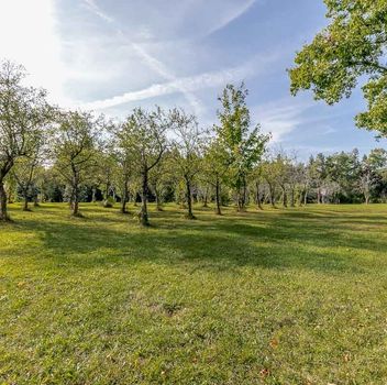 Residential Freehold 3515 Sideroad 10 N/A Bradford West Gwillimbury For {
  "AboveGradeFinishedArea": 0,
  "AboveGradeFinishedAreaSource": "",
  "AboveGradeFinishedAreaUnits": "",
  "Acreage": "",
  "Active": true,
  "Address": "3515 Sideroad 10 N/A",
  "AirConditioning": "Central Air",
  "AirConditioningYN": false,
  "Amps": "",
  "Appliances": "",
  "ApproxAge": "",
  "ApproxSquareFootage": "1500-2000",
  "Area": "Simcoe",
  "AssessmentYear": "",
  "AssignmentYN": false,
  "AssociationAmenities": "",
  "AssociationFee": "",
  "AssociationFeeIncludes": "",
  "AssociationName": "",
  "AssociationYN": false,
  "Balcony": "",
  "Basement": "Partially Finished, Walk-Out",
  "BasementYN": false,
  "BathroomsFull": 0,
  "BathroomsHalf": 0,
  "Bedrooms": 3,
  "BedroomsDisplay": "3+1",
  "BedroomsPlus": 1,
  "BedroomsTotal": 4,
  "BelowGradeFinishedArea": 0,
  "BelowGradeFinishedAreaSource": "",
  "BelowGradeFinishedAreaUnits": "",
  "Board": "Toronto Regional Real Estate Board",
  "BuilderName": "",
  "BuildingAreaTotal": "",
  "BuildingAreaUnits": "",
  "BuildingName": "",
  "BusinessName": "",
  "BusinessType": "",
  "BuyerAgencyCompensation": "2.5%",
  "BuyerAgencyCompensationType": "",
  "BuyerAgentAOR": "",
  "BuyerAgentEmail": "",
  "BuyerAgentFullName": "",
  "BuyerAgentId": "",
  "BuyerAgentMlsId": "",
  "BuyerAgentPhone": "",
  "BuyerOfficeId": "",
  "BuyerOfficeMlsId": "",
  "BuyerOfficeName": "",
  "BuyerOfficePhone": "",
  "CarportSpaces": 0,
  "Category": "MLS",
  "ChattelsYN": false,
  "City": "Bradford West Gwillimbury",
  "ClassSearch": "Residential",
  "ClosedDate": "0001-01-01T00:00:00",
  "CoListAgentDesignation": "",
  "CoListAgentEmail": "",
  "CoListAgentID": "",
  "CoListAgentMLSID": "",
  "CoListAgentName": "",
  "CoListAgentPhone": "",
  "CoListOfficeID": "248506",
  "CoListOfficeMLSID": "248506",
  "CoListOfficeName": "CENTURY 21 HERITAGE GROUP LTD.",
  "CommercialCondoFee": "",
  "CommercialCondoFeeFrequency": "",
  "CommercialCondoFees": "",
  "Commission": "2.5%",
  "Community": "Bradford",
  "CommunityFeatures": "",
  "Condition": "",
  "ConditionalExpiryDate": "0001-01-01T00:00:00",
  "ConditionOfSale": "",
  "CondoCorpNumber": "",
  "ConsentToAdvertiseYN": true,
  "ConstructionMaterials": "Brick, Stone",
  "ContactAfterExpiryYN": false,
  "ContractDate": "2026-09-23T00:00:00",
  "Cooling": "Central Air",
  "CoolingYN": false,
  "Country": "",
  "CoverPhoto": "https://media.remarketer.ca/PROPTX/N13821630-1.jpg?tr=di-propertynoimage_pj5ksb5iM,f-jpg,q-90",
  "CrossStreet": "Sideroad 10 & Line 10",
  "DaysOnMarket": 0,
  "DepositRequired": "",
  "Directions": "Sideroad 10 & Line 10",
  "Disclosures": "",
  "DisplayAddress": "3515 Sideroad 10 N/A",
  "DisplayAddressYN": true,
  "DistributeToInternetYN": true,
  "Drive": "",
  "Electric": "",
  "ElectricExpense": "",
  "ElectricOnPropertyYN": false,
  "ElectricYN": false,
  "ElementarySchool": "",
  "ElevatorYN": false,
  "Exclusions": "N/A",
  "Expenses": "",
  "ExpiryDate": "2027-01-16T00:00:00",
  "Exposure": "",
  "Exterior": "",
  "ExteriorFeatures": "",
  "Extras": "",
  "FamilyRoom": "",
  "FireplaceTotal": 0,
  "FireplaceYN": true,
  "Flooring": "",
  "FloorPlans": "",
  "FoundationDetails": "Concrete Block",
  "Franchise": "",
  "FranchiseYN": false,
  "FurnishedYN": false,
  "GarageSpaces": 2,
  "GarageType": "Detached",
  "GarageYN": true,
  "GasYN": false,
  "Geometry": {
    "lat": 44.1414,
    "lon": -79.6086
  },
  "GymYN": false,
  "HeatingYN": false,
  "HeatSource": "Oil",
  "HeatType": "Forced Air",
  "HighSchool": "",
  "HoldoverDays": "90",
  "id": "N13821630_PROPTX",
  "IDX": "Y",
  "IDXYN": true,
  "Inclusions": "Compare To Lots In Town, Tons Of Value In This Property. Wonderful Location. Fridge, Washer, Dryer, Built In Dishwasher",
  "InteriorFeatures": "In-Law Capability",
  "Kitchens": 1,
  "KitchensPlus": 0,
  "LandLeaseAmount": "",
  "LandLeaseYN": false,
  "LastStatus": "New",
  "Latitude": 44.1414,
  "LaundryFeatures": "",
  "LaundryLevel": "",
  "Lease": "",
  "LeaseAgreement": "",
  "LeaseAgreementYN": false,
  "LeaseFrequency": "",
  "LeaseTerm": "",
  "LegalDescription": "",
  "Level": "",
  "ListAgentDesignation": "",
  "ListAgentEmail": "",
  "ListAgentID": "9546639",
  "ListAgentMLSID": "9546639",
  "ListAgentName": "PETER FERRAGINE, Salesperson",
  "ListAgentPhone": "",
  "ListAOR": "Toronto Regional Real Estate Board",
  "ListBrokerage": "CENTURY 21 HERITAGE GROUP LTD.",
  "ListingEntryDate": "2026-09-23T23:52:57",
  "ListingId": "N13821630",
  "ListingKey": "N13821630",
  "ListOfficeID": "248506",
  "ListOfficeMLSID": "248506",
  "ListOfficePhone": "",
  "ListPrice": 999999,
  "ListPricePerUnit": 0,
  "ListPriceUnit": "",
  "LivingArea": "1500-2000",
  "LivingAreaSource": "",
  "LivingAreaUnits": "",
  "Locker": "",
  "Longitude": -79.6086,
  "LotDepth": 756.02,
  "LotFeatures": "",
  "LotFront": 275.85,
  "LotIrregularities": "",
  "LotShape": "",
  "LotSizeArea": "",
  "LotSizeAreaUnits": "",
  "LotSizeCode": "Feet",
  "LotSizeDimensions": "",
  "Maintenance": "",
  "Media": [
    {
      "id": "58fdfa9d-71ca-4453-8d9c-cfa61423bfba-nw_PROPTX",
      "ListingId": "N13821630",
      "ListingKey": "N13821630",
      "MediaId": "58fdfa9d-71ca-4453-8d9c-cfa61423bfba-nw",
      "ModificationTimestamp": "2026-09-23T23:52:57",
      "MediaOrder": 1,
      "Active": true,
      "MediaSize": "",
      "ResourceName": "Property",
      "ClassName": "ResidentialFree",
      "MediaDescription": "",
      "PreferredPhotoYN": true,
      "WaterMarkYN": false,
      "MediaName": "",
      "MediaCategory": "Photo",
      "MediaHTML": "",
      "MediaType": "image/jpeg",
      "MediaUrl": "https://trreb-image.ampre.ca/eIUkRtLkTZRSQPp_w6CX8yc_iVpYNDutOD8R4WueE4U/rs:fit:3840:3840/L3RycmViL2xpc3RpbmdzLzQ0LzczLzQxLzkyL3AvNThmZGZhOWQtNzFjYS00NDUzLThkOWMtY2ZhNjE0MjNiZmJhLmpwZw.jpg",
      "MediaWidth": "1200",
      "MediaHeight": "800",
      "MediaStatus": "Active",
      "Source": "PROPTX",
      "OriginatingSystemName": "",
      "RTimestampSql": "2026-09-24T00:05:16.31"
    },
    {
      "id": "59fe1a57-d385-4736-bae9-d089e6be80c7-nw_PROPTX",
      "ListingId": "N13821630",
      "ListingKey": "N13821630",
      "MediaId": "59fe1a57-d385-4736-bae9-d089e6be80c7-nw",
      "ModificationTimestamp": "2026-09-23T23:52:57",
      "MediaOrder": 2,
      "Active": true,
      "MediaSize": "",
      "ResourceName": "Property",
      "ClassName": "ResidentialFree",
      "MediaDescription": "",
      "PreferredPhotoYN": false,
      "WaterMarkYN": false,
      "MediaName": "",
      "MediaCategory": "Photo",
      "MediaHTML": "",
      "MediaType": "image/jpeg",
      "MediaUrl": "https://trreb-image.ampre.ca/jI6A6cXbm4Xtjjf2Tq7g48RVPV6RlHc0Nn_AxVzsqcQ/rs:fit:3840:3840/L3RycmViL2xpc3RpbmdzLzQ0LzczLzQxLzkyL3AvNTlmZTFhNTctZDM4NS00NzM2LWJhZTktZDA4OWU2YmU4MGM3LmpwZw.jpg",
      "MediaWidth": "1200",
      "MediaHeight": "800",
      "MediaStatus": "Active",
      "Source": "PROPTX",
      "OriginatingSystemName": "",
      "RTimestampSql": "2026-09-24T00:05:16.343"
    },
    {
      "id": "beae29e6-130b-4529-aba0-07351f6100c6-nw_PROPTX",
      "ListingId": "N13821630",
      "ListingKey": "N13821630",
      "MediaId": "beae29e6-130b-4529-aba0-07351f6100c6-nw",
      "ModificationTimestamp": "2026-09-23T23:52:57",
      "MediaOrder": 3,
      "Active": true,
      "MediaSize": "",
      "ResourceName": "Property",
      "ClassName": "ResidentialFree",
      "MediaDescription": "",
      "PreferredPhotoYN": false,
      "WaterMarkYN": false,
      "MediaName": "",
      "MediaCategory": "Photo",
      "MediaHTML": "",
      "MediaType": "image/jpeg",
      "MediaUrl": "https://trreb-image.ampre.ca/QEghrMmXYi1bPQ-0sQ3DfMzRS7-qnU3I5vYQrCZ0TKU/rs:fit:3840:3840/L3RycmViL2xpc3RpbmdzLzQ0LzczLzQxLzkyL3AvYmVhZTI5ZTYtMTMwYi00NTI5LWFiYTAtMDczNTFmNjEwMGM2LmpwZw.jpg",
      "MediaWidth": "1200",
      "MediaHeight": "800",
      "MediaStatus": "Active",
      "Source": "PROPTX",
      "OriginatingSystemName": "",
      "RTimestampSql": "2026-09-24T00:05:16.767"
    },
    {
      "id": "774d0960-775f-42c0-b369-a3895ce8831b-nw_PROPTX",
      "ListingId": "N13821630",
      "ListingKey": "N13821630",
      "MediaId": "774d0960-775f-42c0-b369-a3895ce8831b-nw",
      "ModificationTimestamp": "2026-09-23T23:52:57",
      "MediaOrder": 4,
      "Active": true,
      "MediaSize": "",
      "ResourceName": "Property",
      "ClassName": "ResidentialFree",
      "MediaDescription": "",
      "PreferredPhotoYN": false,
      "WaterMarkYN": false,
      "MediaName": "",
      "MediaCategory": "Photo",
      "MediaHTML": "",
      "MediaType": "image/jpeg",
      "MediaUrl": "https://trreb-image.ampre.ca/rg4BwsrGLEnGchJ4gvTzyMUaxVSEGWGMC7u_G_uQVjw/rs:fit:3840:3840/L3RycmViL2xpc3RpbmdzLzQ0LzczLzQxLzkyL3AvNzc0ZDA5NjAtNzc1Zi00MmMwLWIzNjktYTM4OTVjZTg4MzFiLmpwZw.jpg",
      "MediaWidth": "1200",
      "MediaHeight": "800",
      "MediaStatus": "Active",
      "Source": "PROPTX",
      "OriginatingSystemName": "",
      "RTimestampSql": "2026-09-24T00:05:16.397"
    },
    {
      "id": "1f7c0676-d657-4c8f-9b27-9f98981c5a38-nw_PROPTX",
      "ListingId": "N13821630",
      "ListingKey": "N13821630",
      "MediaId": "1f7c0676-d657-4c8f-9b27-9f98981c5a38-nw",
      "ModificationTimestamp": "2026-09-23T23:52:57",
      "MediaOrder": 5,
      "Active": true,
      "MediaSize": "",
      "ResourceName": "Property",
      "ClassName": "ResidentialFree",
      "MediaDescription": "",
      "PreferredPhotoYN": false,
      "WaterMarkYN": false,
      "MediaName": "",
      "MediaCategory": "Photo",
      "MediaHTML": "",
      "MediaType": "image/jpeg",
      "MediaUrl": "https://trreb-image.ampre.ca/bNS4_jUsrVzh_hJ-J3N5rCvgID3BL3k5WB0XVSuzOTw/rs:fit:3840:3840/L3RycmViL2xpc3RpbmdzLzQ0LzczLzQxLzkyL3AvMWY3YzA2NzYtZDY1Ny00YzhmLTliMjctOWY5ODk4MWM1YTM4LmpwZw.jpg",
      "MediaWidth": "1200",
      "MediaHeight": "800",
      "MediaStatus": "Active",
      "Source": "PROPTX",
      "OriginatingSystemName": "",
      "RTimestampSql": "2026-09-24T00:05:16.143"
    },
    {
      "id": "7f395855-ebb3-49e7-9f5c-d38b86420b70-nw_PROPTX",
      "ListingId": "N13821630",
      "ListingKey": "N13821630",
      "MediaId": "7f395855-ebb3-49e7-9f5c-d38b86420b70-nw",
      "ModificationTimestamp": "2026-09-23T23:52:57",
      "MediaOrder": 6,
      "Active": true,
      "MediaSize": "",
      "ResourceName": "Property",
      "ClassName": "ResidentialFree",
      "MediaDescription": "",
      "PreferredPhotoYN": false,
      "WaterMarkYN": false,
      "MediaName": "",
      "MediaCategory": "Photo",
      "MediaHTML": "",
      "MediaType": "image/jpeg",
      "MediaUrl": "https://trreb-image.ampre.ca/9VOWjV0-fj9WJvBTzWODSPJb8KK7XR65Z1l1JlqatRI/rs:fit:3840:3840/L3RycmViL2xpc3RpbmdzLzQ0LzczLzQxLzkyL3AvN2YzOTU4NTUtZWJiMy00OWU3LTlmNWMtZDM4Yjg2NDIwYjcwLmpwZw.jpg",
      "MediaWidth": "1200",
      "MediaHeight": "800",
      "MediaStatus": "Active",
      "Source": "PROPTX",
      "OriginatingSystemName": "",
      "RTimestampSql": "2026-09-24T00:05:16.417"
    },
    {
      "id": "151b4017-d2ab-459a-93aa-0e4736acef39-nw_PROPTX",
      "ListingId": "N13821630",
      "ListingKey": "N13821630",
      "MediaId": "151b4017-d2ab-459a-93aa-0e4736acef39-nw",
      "ModificationTimestamp": "2026-09-23T23:52:57",
      "MediaOrder": 7,
      "Active": true,
      "MediaSize": "",
      "ResourceName": "Property",
      "ClassName": "ResidentialFree",
      "MediaDescription": "",
      "PreferredPhotoYN": false,
      "WaterMarkYN": false,
      "MediaName": "",
      "MediaCategory": "Photo",
      "MediaHTML": "",
      "MediaType": "image/jpeg",
      "MediaUrl": "https://trreb-image.ampre.ca/OHjV5F6-NBo58Oqi2RUFbGXwA8A8c8eHPpHvHRr39qk/rs:fit:3840:3840/L3RycmViL2xpc3RpbmdzLzQ0LzczLzQxLzkyL3AvMTUxYjQwMTctZDJhYi00NTlhLTkzYWEtMGU0NzM2YWNlZjM5LmpwZw.jpg",
      "MediaWidth": "1200",
      "MediaHeight": "800",
      "MediaStatus": "Active",
      "Source": "PROPTX",
      "OriginatingSystemName": "",
      "RTimestampSql": "2026-09-24T00:05:16.04"
    },
    {
      "id": "ab116071-3025-441e-b1e8-4f2891513d85-nw_PROPTX",
      "ListingId": "N13821630",
      "ListingKey": "N13821630",
      "MediaId": "ab116071-3025-441e-b1e8-4f2891513d85-nw",
      "ModificationTimestamp": "2026-09-23T23:52:57",
      "MediaOrder": 8,
      "Active": true,
      "MediaSize": "",
      "ResourceName": "Property",
      "ClassName": "ResidentialFree",
      "MediaDescription": "",
      "PreferredPhotoYN": false,
      "WaterMarkYN": false,
      "MediaName": "",
      "MediaCategory": "Photo",
      "MediaHTML": "",
      "MediaType": "image/jpeg",
      "MediaUrl": "https://trreb-image.ampre.ca/l-P91hqdP0M_PtqPiWy6ucJ6J9b4aKw4azjRtU3Ko_o/rs:fit:3840:3840/L3RycmViL2xpc3RpbmdzLzQ0LzczLzQxLzkyL3AvYWIxMTYwNzEtMzAyNS00NDFlLWIxZTgtNGYyODkxNTEzZDg1LmpwZw.jpg",
      "MediaWidth": "1200",
      "MediaHeight": "800",
      "MediaStatus": "Active",
      "Source": "PROPTX",
      "OriginatingSystemName": "",
      "RTimestampSql": "2026-09-24T00:05:16.7"
    },
    {
      "id": "fc96f80f-d4c6-4edf-99f5-45ec09a0789e-nw_PROPTX",
      "ListingId": "N13821630",
      "ListingKey": "N13821630",
      "MediaId": "fc96f80f-d4c6-4edf-99f5-45ec09a0789e-nw",
      "ModificationTimestamp": "2026-09-23T23:52:57",
      "MediaOrder": 9,
      "Active": true,
      "MediaSize": "",
      "ResourceName": "Property",
      "ClassName": "ResidentialFree",
      "MediaDescription": "",
      "PreferredPhotoYN": false,
      "WaterMarkYN": false,
      "MediaName": "",
      "MediaCategory": "Photo",
      "MediaHTML": "",
      "MediaType": "image/jpeg",
      "MediaUrl": "https://trreb-image.ampre.ca/cPxNc1SWxX1VB5hSbQCaWw2jFzKGpfOOtVFYQRp5MQ0/rs:fit:3840:3840/L3RycmViL2xpc3RpbmdzLzQ0LzczLzQxLzkyL3AvZmM5NmY4MGYtZDRjNi00ZWRmLTk5ZjUtNDVlYzA5YTA3ODllLmpwZw.jpg",
      "MediaWidth": "1200",
      "MediaHeight": "800",
      "MediaStatus": "Active",
      "Source": "PROPTX",
      "OriginatingSystemName": "",
      "RTimestampSql": "2026-09-24T00:05:16.967"
    },
    {
      "id": "8ec7cb76-cde4-42e3-ab7a-40ba4f941471-nw_PROPTX",
      "ListingId": "N13821630",
      "ListingKey": "N13821630",
      "MediaId": "8ec7cb76-cde4-42e3-ab7a-40ba4f941471-nw",
      "ModificationTimestamp": "2026-09-23T23:52:57",
      "MediaOrder": 10,
      "Active": true,
      "MediaSize": "",
      "ResourceName": "Property",
      "ClassName": "ResidentialFree",
      "MediaDescription": "",
      "PreferredPhotoYN": false,
      "WaterMarkYN": false,
      "MediaName": "",
      "MediaCategory": "Photo",
      "MediaHTML": "",
      "MediaType": "image/jpeg",
      "MediaUrl": "https://trreb-image.ampre.ca/WzZd-2LIgfYcybn_LBXhmaWOE5V32DBpFJyRy7716gs/rs:fit:3840:3840/L3RycmViL2xpc3RpbmdzLzQ0LzczLzQxLzkyL3AvOGVjN2NiNzYtY2RlNC00MmUzLWFiN2EtNDBiYTRmOTQxNDcxLmpwZw.jpg",
      "MediaWidth": "1200",
      "MediaHeight": "800",
      "MediaStatus": "Active",
      "Source": "PROPTX",
      "OriginatingSystemName": "",
      "RTimestampSql": "2026-09-24T00:05:16.553"
    },
    {
      "id": "f4485bb9-295a-4b28-ac47-a69857cfe4fe-nw_PROPTX",
      "ListingId": "N13821630",
      "ListingKey": "N13821630",
      "MediaId": "f4485bb9-295a-4b28-ac47-a69857cfe4fe-nw",
      "ModificationTimestamp": "2026-09-23T23:52:57",
      "MediaOrder": 11,
      "Active": true,
      "MediaSize": "",
      "ResourceName": "Property",
      "ClassName": "ResidentialFree",
      "MediaDescription": "",
      "PreferredPhotoYN": false,
      "WaterMarkYN": false,
      "MediaName": "",
      "MediaCategory": "Photo",
      "MediaHTML": "",
      "MediaType": "image/jpeg",
      "MediaUrl": "https://trreb-image.ampre.ca/DdYmXB5jMtrhDbFubba5BLJs1p5QDdz0aZNhxAeLaN8/rs:fit:3840:3840/L3RycmViL2xpc3RpbmdzLzQ0LzczLzQxLzkyL3AvZjQ0ODViYjktMjk1YS00YjI4LWFjNDctYTY5ODU3Y2ZlNGZlLmpwZw.jpg",
      "MediaWidth": "1200",
      "MediaHeight": "800",
      "MediaStatus": "Active",
      "Source": "PROPTX",
      "OriginatingSystemName": "",
      "RTimestampSql": "2026-09-24T00:05:16.93"
    },
    {
      "id": "0b7e845f-e8a6-43d1-bb58-b55ca50d8db5-nw_PROPTX",
      "ListingId": "N13821630",
      "ListingKey": "N13821630",
      "MediaId": "0b7e845f-e8a6-43d1-bb58-b55ca50d8db5-nw",
      "ModificationTimestamp": "2026-09-23T23:52:57",
      "MediaOrder": 12,
      "Active": true,
      "MediaSize": "",
      "ResourceName": "Property",
      "ClassName": "ResidentialFree",
      "MediaDescription": "",
      "PreferredPhotoYN": false,
      "WaterMarkYN": false,
      "MediaName": "",
      "MediaCategory": "Photo",
      "MediaHTML": "",
      "MediaType": "image/jpeg",
      "MediaUrl": "https://trreb-image.ampre.ca/13IcKlHzKA-sF2vjuDGy_gDfaQMOkG1_v5dqMlc8Q4Y/rs:fit:3840:3840/L3RycmViL2xpc3RpbmdzLzQ0LzczLzQxLzkyL3AvMGI3ZTg0NWYtZThhNi00M2QxLWJiNTgtYjU1Y2E1MGQ4ZGI1LmpwZw.jpg",
      "MediaWidth": "1200",
      "MediaHeight": "800",
      "MediaStatus": "Active",
      "Source": "PROPTX",
      "OriginatingSystemName": "",
      "RTimestampSql": "2026-09-24T00:05:15.977"
    },
    {
      "id": "6e87864e-531f-481b-a5e7-b6e5c988ecb5-nw_PROPTX",
      "ListingId": "N13821630",
      "ListingKey": "N13821630",
      "MediaId": "6e87864e-531f-481b-a5e7-b6e5c988ecb5-nw",
      "ModificationTimestamp": "2026-09-23T23:52:57",
      "MediaOrder": 13,
      "Active": true,
      "MediaSize": "",
      "ResourceName": "Property",
      "ClassName": "ResidentialFree",
      "MediaDescription": "",
      "PreferredPhotoYN": false,
      "WaterMarkYN": false,
      "MediaName": "",
      "MediaCategory": "Photo",
      "MediaHTML": "",
      "MediaType": "image/jpeg",
      "MediaUrl": "https://trreb-image.ampre.ca/kSQ4CqOJIZWR-QeBOYSh4QyhyP1te0HqxL87klR-jIw/rs:fit:3840:3840/L3RycmViL2xpc3RpbmdzLzQ0LzczLzQxLzkyL3AvNmU4Nzg2NGUtNTMxZi00ODFiLWE1ZTctYjZlNWM5ODhlY2I1LmpwZw.jpg",
      "MediaWidth": "1200",
      "MediaHeight": "800",
      "MediaStatus": "Active",
      "Source": "PROPTX",
      "OriginatingSystemName": "",
      "RTimestampSql": "2026-09-24T00:05:16.38"
    },
    {
      "id": "b0d62cc1-a40c-48ce-b75d-86c346c0748a-nw_PROPTX",
      "ListingId": "N13821630",
      "ListingKey": "N13821630",
      "MediaId": "b0d62cc1-a40c-48ce-b75d-86c346c0748a-nw",
      "ModificationTimestamp": "2026-09-23T23:52:57",
      "MediaOrder": 14,
      "Active": true,
      "MediaSize": "",
      "ResourceName": "Property",
      "ClassName": "ResidentialFree",
      "MediaDescription": "",
      "PreferredPhotoYN": false,
      "WaterMarkYN": false,
      "MediaName": "",
      "MediaCategory": "Photo",
      "MediaHTML": "",
      "MediaType": "image/jpeg",
      "MediaUrl": "https://trreb-image.ampre.ca/qNgbyUygLmzqGyEEfzP8EMQsdn6pFj6ee7uVX0XvLYo/rs:fit:3840:3840/L3RycmViL2xpc3RpbmdzLzQ0LzczLzQxLzkyL3AvYjBkNjJjYzEtYTQwYy00OGNlLWI3NWQtODZjMzQ2YzA3NDhhLmpwZw.jpg",
      "MediaWidth": "1200",
      "MediaHeight": "800",
      "MediaStatus": "Active",
      "Source": "PROPTX",
      "OriginatingSystemName": "",
      "RTimestampSql": "2026-09-24T00:05:16.727"
    },
    {
      "id": "f773a0b5-298d-40df-9b03-e175dc25ef6c-nw_PROPTX",
      "ListingId": "N13821630",
      "ListingKey": "N13821630",
      "MediaId": "f773a0b5-298d-40df-9b03-e175dc25ef6c-nw",
      "ModificationTimestamp": "2026-09-23T23:52:57",
      "MediaOrder": 15,
      "Active": true,
      "MediaSize": "",
      "ResourceName": "Property",
      "ClassName": "ResidentialFree",
      "MediaDescription": "",
      "PreferredPhotoYN": false,
      "WaterMarkYN": false,
      "MediaName": "",
      "MediaCategory": "Photo",
      "MediaHTML": "",
      "MediaType": "image/jpeg",
      "MediaUrl": "https://trreb-image.ampre.ca/aSpIKAK5P33oAlLwaKjiz37yoCLOtFor6so_5jwmYD8/rs:fit:3840:3840/L3RycmViL2xpc3RpbmdzLzQ0LzczLzQxLzkyL3AvZjc3M2EwYjUtMjk4ZC00MGRmLTliMDMtZTE3NWRjMjVlZjZjLmpwZw.jpg",
      "MediaWidth": "1200",
      "MediaHeight": "800",
      "MediaStatus": "Active",
      "Source": "PROPTX",
      "OriginatingSystemName": "",
      "RTimestampSql": "2026-09-24T00:05:16.95"
    },
    {
      "id": "245697d4-0a64-41cf-8ab7-8018ef8705f6-nw_PROPTX",
      "ListingId": "N13821630",
      "ListingKey": "N13821630",
      "MediaId": "245697d4-0a64-41cf-8ab7-8018ef8705f6-nw",
      "ModificationTimestamp": "2026-09-23T23:52:57",
      "MediaOrder": 16,
      "Active": true,
      "MediaSize": "",
      "ResourceName": "Property",
      "ClassName": "ResidentialFree",
      "MediaDescription": "",
      "PreferredPhotoYN": false,
      "WaterMarkYN": false,
      "MediaName": "",
      "MediaCategory": "Photo",
      "MediaHTML": "",
      "MediaType": "image/jpeg",
      "MediaUrl": "https://trreb-image.ampre.ca/oIObEf5MSCX0TPSTL8jLWk-3h7DFj2ShBbdCtpRVXlE/rs:fit:3840:3840/L3RycmViL2xpc3RpbmdzLzQ0LzczLzQxLzkyL3AvMjQ1Njk3ZDQtMGE2NC00MWNmLThhYjctODAxOGVmODcwNWY2LmpwZw.jpg",
      "MediaWidth": "1200",
      "MediaHeight": "800",
      "MediaStatus": "Active",
      "Source": "PROPTX",
      "OriginatingSystemName": "",
      "RTimestampSql": "2026-09-24T00:05:16.17"
    },
    {
      "id": "3cc5d4fb-7075-422a-ac7c-2dc03ccb8b31-nw_PROPTX",
      "ListingId": "N13821630",
      "ListingKey": "N13821630",
      "MediaId": "3cc5d4fb-7075-422a-ac7c-2dc03ccb8b31-nw",
      "ModificationTimestamp": "2026-09-23T23:52:57",
      "MediaOrder": 17,
      "Active": true,
      "MediaSize": "",
      "ResourceName": "Property",
      "ClassName": "ResidentialFree",
      "MediaDescription": "",
      "PreferredPhotoYN": false,
      "WaterMarkYN": false,
      "MediaName": "",
      "MediaCategory": "Photo",
      "MediaHTML": "",
      "MediaType": "image/jpeg",
      "MediaUrl": "https://trreb-image.ampre.ca/qriWh2N1gdS_o6hkg-wPMHjzY3Fooibb87fz6pJhKEo/rs:fit:3840:3840/L3RycmViL2xpc3RpbmdzLzQ0LzczLzQxLzkyL3AvM2NjNWQ0ZmItNzA3NS00MjJhLWFjN2MtMmRjMDNjY2I4YjMxLmpwZw.jpg",
      "MediaWidth": "1200",
      "MediaHeight": "800",
      "MediaStatus": "Active",
      "Source": "PROPTX",
      "OriginatingSystemName": "",
      "RTimestampSql": "2026-09-24T00:05:16.23"
    },
    {
      "id": "8c3af677-a90c-4d83-9773-4d62b66329d9-nw_PROPTX",
      "ListingId": "N13821630",
      "ListingKey": "N13821630",
      "MediaId": "8c3af677-a90c-4d83-9773-4d62b66329d9-nw",
      "ModificationTimestamp": "2026-09-23T23:52:57",
      "MediaOrder": 18,
      "Active": true,
      "MediaSize": "",
      "ResourceName": "Property",
      "ClassName": "ResidentialFree",
      "MediaDescription": "",
      "PreferredPhotoYN": false,
      "WaterMarkYN": false,
      "MediaName": "",
      "MediaCategory": "Photo",
      "MediaHTML": "",
      "MediaType": "image/jpeg",
      "MediaUrl": "https://trreb-image.ampre.ca/xDdOlPO2kwLKQWcKCq3NbjA3bMKzpyWfV1tUMMOWs-4/rs:fit:3840:3840/L3RycmViL2xpc3RpbmdzLzQ0LzczLzQxLzkyL3AvOGMzYWY2NzctYTkwYy00ZDgzLTk3NzMtNGQ2MmI2NjMyOWQ5LmpwZw.jpg",
      "MediaWidth": "1200",
      "MediaHeight": "800",
      "MediaStatus": "Active",
      "Source": "PROPTX",
      "OriginatingSystemName": "",
      "RTimestampSql": "2026-09-24T00:05:16.533"
    },
    {
      "id": "15cb4b51-481d-4d71-9a18-e52a1b670e46-nw_PROPTX",
      "ListingId": "N13821630",
      "ListingKey": "N13821630",
      "MediaId": "15cb4b51-481d-4d71-9a18-e52a1b670e46-nw",
      "ModificationTimestamp": "2026-09-23T23:52:57",
      "MediaOrder": 19,
      "Active": true,
      "MediaSize": "",
      "ResourceName": "Property",
      "ClassName": "ResidentialFree",
      "MediaDescription": "",
      "PreferredPhotoYN": false,
      "WaterMarkYN": false,
      "MediaName": "",
      "MediaCategory": "Photo",
      "MediaHTML": "",
      "MediaType": "image/jpeg",
      "MediaUrl": "https://trreb-image.ampre.ca/R_F5eDzF3STr3CPKUfFj0S9Rzk7nMB8vW5osmw_Lv-k/rs:fit:3840:3840/L3RycmViL2xpc3RpbmdzLzQ0LzczLzQxLzkyL3AvMTVjYjRiNTEtNDgxZC00ZDcxLTlhMTgtZTUyYTFiNjcwZTQ2LmpwZw.jpg",
      "MediaWidth": "1200",
      "MediaHeight": "800",
      "MediaStatus": "Active",
      "Source": "PROPTX",
      "OriginatingSystemName": "",
      "RTimestampSql": "2026-09-24T00:05:16.057"
    },
    {
      "id": "d0ffe1be-61b1-4eec-8896-184662cefd4d-nw_PROPTX",
      "ListingId": "N13821630",
      "ListingKey": "N13821630",
      "MediaId": "d0ffe1be-61b1-4eec-8896-184662cefd4d-nw",
      "ModificationTimestamp": "2026-09-23T23:52:57",
      "MediaOrder": 20,
      "Active": true,
      "MediaSize": "",
      "ResourceName": "Property",
      "ClassName": "ResidentialFree",
      "MediaDescription": "",
      "PreferredPhotoYN": false,
      "WaterMarkYN": false,
      "MediaName": "",
      "MediaCategory": "Photo",
      "MediaHTML": "",
      "MediaType": "image/jpeg",
      "MediaUrl": "https://trreb-image.ampre.ca/HMrHwdPMJXZvexpVHlFHADaQdYibi8DmkdyIeAkeYZo/rs:fit:3840:3840/L3RycmViL2xpc3RpbmdzLzQ0LzczLzQxLzkyL3AvZDBmZmUxYmUtNjFiMS00ZWVjLTg4OTYtMTg0NjYyY2VmZDRkLmpwZw.jpg",
      "MediaWidth": "1200",
      "MediaHeight": "800",
      "MediaStatus": "Active",
      "Source": "PROPTX",
      "OriginatingSystemName": "",
      "RTimestampSql": "2026-09-24T00:05:16.82"
    },
    {
      "id": "d46dcc8c-5df7-41e0-85e7-cc613d34a695-nw_PROPTX",
      "ListingId": "N13821630",
      "ListingKey": "N13821630",
      "MediaId": "d46dcc8c-5df7-41e0-85e7-cc613d34a695-nw",
      "ModificationTimestamp": "2026-09-23T23:52:57",
      "MediaOrder": 21,
      "Active": true,
      "MediaSize": "",
      "ResourceName": "Property",
      "ClassName": "ResidentialFree",
      "MediaDescription": "",
      "PreferredPhotoYN": false,
      "WaterMarkYN": false,
      "MediaName": "",
      "MediaCategory": "Photo",
      "MediaHTML": "",
      "MediaType": "image/jpeg",
      "MediaUrl": "https://trreb-image.ampre.ca/EH5o5vzTcX1jQe47CfFFoqPMyprTSdfz_sAbjx9oSPI/rs:fit:3840:3840/L3RycmViL2xpc3RpbmdzLzQ0LzczLzQxLzkyL3AvZDQ2ZGNjOGMtNWRmNy00MWUwLTg1ZTctY2M2MTNkMzRhNjk1LmpwZw.jpg",
      "MediaWidth": "1200",
      "MediaHeight": "800",
      "MediaStatus": "Active",
      "Source": "PROPTX",
      "OriginatingSystemName": "",
      "RTimestampSql": "2026-09-24T00:05:16.84"
    },
    {
      "id": "e6f65eea-5fc8-4cae-a5cf-58ca9d0abea6-nw_PROPTX",
      "ListingId": "N13821630",
      "ListingKey": "N13821630",
      "MediaId": "e6f65eea-5fc8-4cae-a5cf-58ca9d0abea6-nw",
      "ModificationTimestamp": "2026-09-23T23:52:57",
      "MediaOrder": 22,
      "Active": true,
      "MediaSize": "",
      "ResourceName": "Property",
      "ClassName": "ResidentialFree",
      "MediaDescription": "",
      "PreferredPhotoYN": false,
      "WaterMarkYN": false,
      "MediaName": "",
      "MediaCategory": "Photo",
      "MediaHTML": "",
      "MediaType": "image/jpeg",
      "MediaUrl": "https://trreb-image.ampre.ca/Z0d2GCMO_ro8VTgmQoq1Lwan7uR_Km48QsgAnoL6bcE/rs:fit:3840:3840/L3RycmViL2xpc3RpbmdzLzQ0LzczLzQxLzkyL3AvZTZmNjVlZWEtNWZjOC00Y2FlLWE1Y2YtNThjYTlkMGFiZWE2LmpwZw.jpg",
      "MediaWidth": "1200",
      "MediaHeight": "800",
      "MediaStatus": "Active",
      "Source": "PROPTX",
      "OriginatingSystemName": "",
      "RTimestampSql": "2026-09-24T00:05:16.887"
    },
    {
      "id": "4ebd3b76-92b4-49de-94c1-f230ab405e6d-nw_PROPTX",
      "ListingId": "N13821630",
      "ListingKey": "N13821630",
      "MediaId": "4ebd3b76-92b4-49de-94c1-f230ab405e6d-nw",
      "ModificationTimestamp": "2026-09-23T23:52:57",
      "MediaOrder": 23,
      "Active": true,
      "MediaSize": "",
      "ResourceName": "Property",
      "ClassName": "ResidentialFree",
      "MediaDescription": "",
      "PreferredPhotoYN": false,
      "WaterMarkYN": false,
      "MediaName": "",
      "MediaCategory": "Photo",
      "MediaHTML": "",
      "MediaType": "image/jpeg",
      "MediaUrl": "https://trreb-image.ampre.ca/oePAXKl1Fs-62g_1T4uOmxePXV9oqWxFnrABPs9bWeU/rs:fit:3840:3840/L3RycmViL2xpc3RpbmdzLzQ0LzczLzQxLzkyL3AvNGViZDNiNzYtOTJiNC00OWRlLTk0YzEtZjIzMGFiNDA1ZTZkLmpwZw.jpg",
      "MediaWidth": "1200",
      "MediaHeight": "800",
      "MediaStatus": "Active",
      "Source": "PROPTX",
      "OriginatingSystemName": "",
      "RTimestampSql": "2026-09-24T00:05:16.273"
    },
    {
      "id": "4a6655e5-5a99-430b-b7ae-52c4b9cdfabe-nw_PROPTX",
      "ListingId": "N13821630",
      "ListingKey": "N13821630",
      "MediaId": "4a6655e5-5a99-430b-b7ae-52c4b9cdfabe-nw",
      "ModificationTimestamp": "2026-09-23T23:52:57",
      "MediaOrder": 24,
      "Active": true,
      "MediaSize": "",
      "ResourceName": "Property",
      "ClassName": "ResidentialFree",
      "MediaDescription": "",
      "PreferredPhotoYN": false,
      "WaterMarkYN": false,
      "MediaName": "",
      "MediaCategory": "Photo",
      "MediaHTML": "",
      "MediaType": "image/jpeg",
      "MediaUrl": "https://trreb-image.ampre.ca/sbHgqtfLQ2aSLePfQd69nl2Whw0ZnBJICfXMcHepsRE/rs:fit:3840:3840/L3RycmViL2xpc3RpbmdzLzQ0LzczLzQxLzkyL3AvNGE2NjU1ZTUtNWE5OS00MzBiLWI3YWUtNTJjNGI5Y2RmYWJlLmpwZw.jpg",
      "MediaWidth": "1200",
      "MediaHeight": "800",
      "MediaStatus": "Active",
      "Source": "PROPTX",
      "OriginatingSystemName": "",
      "RTimestampSql": "2026-09-24T00:05:16.257"
    },
    {
      "id": "236ee443-e3c7-407f-97f9-2c7f6bce5467-nw_PROPTX",
      "ListingId": "N13821630",
      "ListingKey": "N13821630",
      "MediaId": "236ee443-e3c7-407f-97f9-2c7f6bce5467-nw",
      "ModificationTimestamp": "2026-09-23T23:52:57",
      "MediaOrder": 25,
      "Active": true,
      "MediaSize": "",
      "ResourceName": "Property",
      "ClassName": "ResidentialFree",
      "MediaDescription": "",
      "PreferredPhotoYN": false,
      "WaterMarkYN": false,
      "MediaName": "",
      "MediaCategory": "Photo",
      "MediaHTML": "",
      "MediaType": "image/jpeg",
      "MediaUrl": "https://trreb-image.ampre.ca/d_CLEVfQLVUmh4ZYQGtE4wgylDyaR_9nFCfKIrIOj4Y/rs:fit:3840:3840/L3RycmViL2xpc3RpbmdzLzQ0LzczLzQxLzkyL3AvMjM2ZWU0NDMtZTNjNy00MDdmLTk3ZjktMmM3ZjZiY2U1NDY3LmpwZw.jpg",
      "MediaWidth": "1200",
      "MediaHeight": "800",
      "MediaStatus": "Active",
      "Source": "PROPTX",
      "OriginatingSystemName": "",
      "RTimestampSql": "2026-09-24T00:05:16.16"
    },
    {
      "id": "13b2abe2-acca-46da-bf48-3ba883bcdde6-nw_PROPTX",
      "ListingId": "N13821630",
      "ListingKey": "N13821630",
      "MediaId": "13b2abe2-acca-46da-bf48-3ba883bcdde6-nw",
      "ModificationTimestamp": "2026-09-23T23:52:57",
      "MediaOrder": 26,
      "Active": true,
      "MediaSize": "",
      "ResourceName": "Property",
      "ClassName": "ResidentialFree",
      "MediaDescription": "",
      "PreferredPhotoYN": false,
      "WaterMarkYN": false,
      "MediaName": "",
      "MediaCategory": "Photo",
      "MediaHTML": "",
      "MediaType": "image/jpeg",
      "MediaUrl": "https://trreb-image.ampre.ca/5X80QsVeHsGHb7bu35DGQG41A3lRdtl36yI3PnPvJKc/rs:fit:3840:3840/L3RycmViL2xpc3RpbmdzLzQ0LzczLzQxLzkyL3AvMTNiMmFiZTItYWNjYS00NmRhLWJmNDgtM2JhODgzYmNkZGU2LmpwZw.jpg",
      "MediaWidth": "1200",
      "MediaHeight": "800",
      "MediaStatus": "Active",
      "Source": "PROPTX",
      "OriginatingSystemName": "",
      "RTimestampSql": "2026-09-24T00:05:16.023"
    },
    {
      "id": "87e5a399-b43c-4f0c-8842-7fe7b698a290-nw_PROPTX",
      "ListingId": "N13821630",
      "ListingKey": "N13821630",
      "MediaId": "87e5a399-b43c-4f0c-8842-7fe7b698a290-nw",
      "ModificationTimestamp": "2026-09-23T23:52:57",
      "MediaOrder": 27,
      "Active": true,
      "MediaSize": "",
      "ResourceName": "Property",
      "ClassName": "ResidentialFree",
      "MediaDescription": "",
      "PreferredPhotoYN": false,
      "WaterMarkYN": false,
      "MediaName": "",
      "MediaCategory": "Photo",
      "MediaHTML": "",
      "MediaType": "image/jpeg",
      "MediaUrl": "https://trreb-image.ampre.ca/68TdcZpddXIDj70hWV1eJHlIG5umR1rik881YIJZKh0/rs:fit:3840:3840/L3RycmViL2xpc3RpbmdzLzQ0LzczLzQxLzkyL3AvODdlNWEzOTktYjQzYy00ZjBjLTg4NDItN2ZlN2I2OThhMjkwLmpwZw.jpg",
      "MediaWidth": "1200",
      "MediaHeight": "800",
      "MediaStatus": "Active",
      "Source": "PROPTX",
      "OriginatingSystemName": "",
      "RTimestampSql": "2026-09-24T00:05:16.52"
    },
    {
      "id": "e0323f5d-8db8-47b1-bbda-ffc72775aede-nw_PROPTX",
      "ListingId": "N13821630",
      "ListingKey": "N13821630",
      "MediaId": "e0323f5d-8db8-47b1-bbda-ffc72775aede-nw",
      "ModificationTimestamp": "2026-09-23T23:52:57",
      "MediaOrder": 28,
      "Active": true,
      "MediaSize": "",
      "ResourceName": "Property",
      "ClassName": "ResidentialFree",
      "MediaDescription": "",
      "PreferredPhotoYN": false,
      "WaterMarkYN": false,
      "MediaName": "",
      "MediaCategory": "Photo",
      "MediaHTML": "",
      "MediaType": "image/jpeg",
      "MediaUrl": "https://trreb-image.ampre.ca/spel-mlUzeuLGZC1tHBkDbGa4LHsYL66fCkzPkoG3Aw/rs:fit:3840:3840/L3RycmViL2xpc3RpbmdzLzQ0LzczLzQxLzkyL3AvZTAzMjNmNWQtOGRiOC00N2IxLWJiZGEtZmZjNzI3NzVhZWRlLmpwZw.jpg",
      "MediaWidth": "1200",
      "MediaHeight": "800",
      "MediaStatus": "Active",
      "Source": "PROPTX",
      "OriginatingSystemName": "",
      "RTimestampSql": "2026-09-24T00:05:16.863"
    },
    {
      "id": "5d05cae7-9750-4dc6-b9ac-b1f41019439f-nw_PROPTX",
      "ListingId": "N13821630",
      "ListingKey": "N13821630",
      "MediaId": "5d05cae7-9750-4dc6-b9ac-b1f41019439f-nw",
      "ModificationTimestamp": "2026-09-23T23:52:57",
      "MediaOrder": 29,
      "Active": true,
      "MediaSize": "",
      "ResourceName": "Property",
      "ClassName": "ResidentialFree",
      "MediaDescription": "",
      "PreferredPhotoYN": false,
      "WaterMarkYN": false,
      "MediaName": "",
      "MediaCategory": "Photo",
      "MediaHTML": "",
      "MediaType": "image/jpeg",
      "MediaUrl": "https://trreb-image.ampre.ca/7t_pQxh6EZEaBkIkwR5FmJgzTBZ2FcWJq9mlIbIV-xU/rs:fit:3840:3840/L3RycmViL2xpc3RpbmdzLzQ0LzczLzQxLzkyL3AvNWQwNWNhZTctOTc1MC00ZGM2LWI5YWMtYjFmNDEwMTk0MzlmLmpwZw.jpg",
      "MediaWidth": "1200",
      "MediaHeight": "800",
      "MediaStatus": "Active",
      "Source": "PROPTX",
      "OriginatingSystemName": "",
      "RTimestampSql": "2026-09-24T00:05:16.36"
    },
    {
      "id": "c87d5ef2-a949-4aad-9e49-5df34bd5217c-nw_PROPTX",
      "ListingId": "N13821630",
      "ListingKey": "N13821630",
      "MediaId": "c87d5ef2-a949-4aad-9e49-5df34bd5217c-nw",
      "ModificationTimestamp": "2026-09-23T23:52:57",
      "MediaOrder": 30,
      "Active": true,
      "MediaSize": "",
      "ResourceName": "Property",
      "ClassName": "ResidentialFree",
      "MediaDescription": "",
      "PreferredPhotoYN": false,
      "WaterMarkYN": false,
      "MediaName": "",
      "MediaCategory": "Photo",
      "MediaHTML": "",
      "MediaType": "image/jpeg",
      "MediaUrl": "https://trreb-image.ampre.ca/GiIkTsn2t_zic8rL2WueUhmo8WfriV2xq4h_jrWDjLQ/rs:fit:3840:3840/L3RycmViL2xpc3RpbmdzLzQ0LzczLzQxLzkyL3AvYzg3ZDVlZjItYTk0OS00YWFkLTllNDktNWRmMzRiZDUyMTdjLmpwZw.jpg",
      "MediaWidth": "1200",
      "MediaHeight": "800",
      "MediaStatus": "Active",
      "Source": "PROPTX",
      "OriginatingSystemName": "",
      "RTimestampSql": "2026-09-24T00:05:16.79"
    },
    {
      "id": "43c4fe2b-e909-48e0-98e7-cc6036f1e625-nw_PROPTX",
      "ListingId": "N13821630",
      "ListingKey": "N13821630",
      "MediaId": "43c4fe2b-e909-48e0-98e7-cc6036f1e625-nw",
      "ModificationTimestamp": "2026-09-23T23:52:57",
      "MediaOrder": 31,
      "Active": true,
      "MediaSize": "",
      "ResourceName": "Property",
      "ClassName": "ResidentialFree",
      "MediaDescription": "",
      "PreferredPhotoYN": false,
      "WaterMarkYN": false,
      "MediaName": "",
      "MediaCategory": "Photo",
      "MediaHTML": "",
      "MediaType": "image/jpeg",
      "MediaUrl": "https://trreb-image.ampre.ca/4VxGxVbaBWAkbwnLFUFfB-LMiewIFairVBhp2pMU_0A/rs:fit:3840:3840/L3RycmViL2xpc3RpbmdzLzQ0LzczLzQxLzkyL3AvNDNjNGZlMmItZTkwOS00OGUwLTk4ZTctY2M2MDM2ZjFlNjI1LmpwZw.jpg",
      "MediaWidth": "1200",
      "MediaHeight": "800",
      "MediaStatus": "Active",
      "Source": "PROPTX",
      "OriginatingSystemName": "",
      "RTimestampSql": "2026-09-24T00:05:16.243"
    },
    {
      "id": "a68a47b1-c7f4-420a-ab24-07c7913ca325-nw_PROPTX",
      "ListingId": "N13821630",
      "ListingKey": "N13821630",
      "MediaId": "a68a47b1-c7f4-420a-ab24-07c7913ca325-nw",
      "ModificationTimestamp": "2026-09-23T23:52:57",
      "MediaOrder": 32,
      "Active": true,
      "MediaSize": "",
      "ResourceName": "Property",
      "ClassName": "ResidentialFree",
      "MediaDescription": "",
      "PreferredPhotoYN": false,
      "WaterMarkYN": false,
      "MediaName": "",
      "MediaCategory": "Photo",
      "MediaHTML": "",
      "MediaType": "image/jpeg",
      "MediaUrl": "https://trreb-image.ampre.ca/blypR0HchrE9fXB7hXanTcxhhzN302uMS1GpMhn5PnQ/rs:fit:3840:3840/L3RycmViL2xpc3RpbmdzLzQ0LzczLzQxLzkyL3AvYTY4YTQ3YjEtYzdmNC00MjBhLWFiMjQtMDdjNzkxM2NhMzI1LmpwZw.jpg",
      "MediaWidth": "1200",
      "MediaHeight": "800",
      "MediaStatus": "Active",
      "Source": "PROPTX",
      "OriginatingSystemName": "",
      "RTimestampSql": "2026-09-24T00:05:16.633"
    },
    {
      "id": "3ae4a63f-4c46-4bab-800d-da4d2fbf9f45-nw_PROPTX",
      "ListingId": "N13821630",
      "ListingKey": "N13821630",
      "MediaId": "3ae4a63f-4c46-4bab-800d-da4d2fbf9f45-nw",
      "ModificationTimestamp": "2026-09-23T23:52:57",
      "MediaOrder": 33,
      "Active": true,
      "MediaSize": "",
      "ResourceName": "Property",
      "ClassName": "ResidentialFree",
      "MediaDescription": "",
      "PreferredPhotoYN": false,
      "WaterMarkYN": false,
      "MediaName": "",
      "MediaCategory": "Photo",
      "MediaHTML": "",
      "MediaType": "image/jpeg",
      "MediaUrl": "https://trreb-image.ampre.ca/6CTYC5DbHKT2nMudStuc7HpmnYe7ji6NOKDnQOVIQoo/rs:fit:3840:3840/L3RycmViL2xpc3RpbmdzLzQ0LzczLzQxLzkyL3AvM2FlNGE2M2YtNGM0Ni00YmFiLTgwMGQtZGE0ZDJmYmY5ZjQ1LmpwZw.jpg",
      "MediaWidth": "1200",
      "MediaHeight": "800",
      "MediaStatus": "Active",
      "Source": "PROPTX",
      "OriginatingSystemName": "",
      "RTimestampSql": "2026-09-24T00:05:16.2"
    },
    {
      "id": "9f7a4ba3-02ce-47bb-b5c3-7c59597d23fc-nw_PROPTX",
      "ListingId": "N13821630",
      "ListingKey": "N13821630",
      "MediaId": "9f7a4ba3-02ce-47bb-b5c3-7c59597d23fc-nw",
      "ModificationTimestamp": "2026-09-23T23:52:57",
      "MediaOrder": 34,
      "Active": true,
      "MediaSize": "",
      "ResourceName": "Property",
      "ClassName": "ResidentialFree",
      "MediaDescription": "",
      "PreferredPhotoYN": false,
      "WaterMarkYN": false,
      "MediaName": "",
      "MediaCategory": "Photo",
      "MediaHTML": "",
      "MediaType": "image/jpeg",
      "MediaUrl": "https://trreb-image.ampre.ca/H-_3J0wXK7eoUCyjcqmXZYn7dPEAZgVaXTPYVWyv93Q/rs:fit:3840:3840/L3RycmViL2xpc3RpbmdzLzQ0LzczLzQxLzkyL3AvOWY3YTRiYTMtMDJjZS00N2JiLWI1YzMtN2M1OTU5N2QyM2ZjLmpwZw.jpg",
      "MediaWidth": "1200",
      "MediaHeight": "800",
      "MediaStatus": "Active",
      "Source": "PROPTX",
      "OriginatingSystemName": "",
      "RTimestampSql": "2026-09-24T00:05:16.617"
    },
    {
      "id": "865eb4d9-01a1-4a96-b306-1a2710a9f49e-nw_PROPTX",
      "ListingId": "N13821630",
      "ListingKey": "N13821630",
      "MediaId": "865eb4d9-01a1-4a96-b306-1a2710a9f49e-nw",
      "ModificationTimestamp": "2026-09-23T23:52:57",
      "MediaOrder": 35,
      "Active": true,
      "MediaSize": "",
      "ResourceName": "Property",
      "ClassName": "ResidentialFree",
      "MediaDescription": "",
      "PreferredPhotoYN": false,
      "WaterMarkYN": false,
      "MediaName": "",
      "MediaCategory": "Photo",
      "MediaHTML": "",
      "MediaType": "image/jpeg",
      "MediaUrl": "https://trreb-image.ampre.ca/x1vf3AhYGqiOZTIiEQD6KXcMO71kKIyqH77do944f_Y/rs:fit:3840:3840/L3RycmViL2xpc3RpbmdzLzQ0LzczLzQxLzkyL3AvODY1ZWI0ZDktMDFhMS00YTk2LWIzMDYtMWEyNzEwYTlmNDllLmpwZw.jpg",
      "MediaWidth": "1200",
      "MediaHeight": "800",
      "MediaStatus": "Active",
      "Source": "PROPTX",
      "OriginatingSystemName": "",
      "RTimestampSql": "2026-09-24T00:05:16.503"
    },
    {
      "id": "f380a7dc-c9b9-48dc-bddc-8b9c38e87aa6-nw_PROPTX",
      "ListingId": "N13821630",
      "ListingKey": "N13821630",
      "MediaId": "f380a7dc-c9b9-48dc-bddc-8b9c38e87aa6-nw",
      "ModificationTimestamp": "2026-09-23T23:52:57",
      "MediaOrder": 36,
      "Active": true,
      "MediaSize": "",
      "ResourceName": "Property",
      "ClassName": "ResidentialFree",
      "MediaDescription": "",
      "PreferredPhotoYN": false,
      "WaterMarkYN": false,
      "MediaName": "",
      "MediaCategory": "Photo",
      "MediaHTML": "",
      "MediaType": "image/jpeg",
      "MediaUrl": "https://trreb-image.ampre.ca/BKXLWtlYG_X_szJUBzGjAAy7FzH5FH4ukGvQL5svs7c/rs:fit:3840:3840/L3RycmViL2xpc3RpbmdzLzQ0LzczLzQxLzkyL3AvZjM4MGE3ZGMtYzliOS00OGRjLWJkZGMtOGI5YzM4ZTg3YWE2LmpwZw.jpg",
      "MediaWidth": "1200",
      "MediaHeight": "800",
      "MediaStatus": "Active",
      "Source": "PROPTX",
      "OriginatingSystemName": "",
      "RTimestampSql": "2026-09-24T00:05:16.913"
    },
    {
      "id": "3b8ed897-a6e9-4c39-81d7-554da1f159ab-nw_PROPTX",
      "ListingId": "N13821630",
      "ListingKey": "N13821630",
      "MediaId": "3b8ed897-a6e9-4c39-81d7-554da1f159ab-nw",
      "ModificationTimestamp": "2026-09-23T23:52:57",
      "MediaOrder": 37,
      "Active": true,
      "MediaSize": "",
      "ResourceName": "Property",
      "ClassName": "ResidentialFree",
      "MediaDescription": "",
      "PreferredPhotoYN": false,
      "WaterMarkYN": false,
      "MediaName": "",
      "MediaCategory": "Photo",
      "MediaHTML": "",
      "MediaType": "image/jpeg",
      "MediaUrl": "https://trreb-image.ampre.ca/hetg9NTRz8maHkyjrp79xmG5BVwqvI1A6ymJ5X-jTHU/rs:fit:3840:3840/L3RycmViL2xpc3RpbmdzLzQ0LzczLzQxLzkyL3AvM2I4ZWQ4OTctYTZlOS00YzM5LTgxZDctNTU0ZGExZjE1OWFiLmpwZw.jpg",
      "MediaWidth": "1200",
      "MediaHeight": "674",
      "MediaStatus": "Active",
      "Source": "PROPTX",
      "OriginatingSystemName": "",
      "RTimestampSql": "2026-09-24T00:05:16.21"
    },
    {
      "id": "50088e78-6908-4dab-aaff-e01cbce88d68-nw_PROPTX",
      "ListingId": "N13821630",
      "ListingKey": "N13821630",
      "MediaId": "50088e78-6908-4dab-aaff-e01cbce88d68-nw",
      "ModificationTimestamp": "2026-09-23T23:52:57",
      "MediaOrder": 38,
      "Active": true,
      "MediaSize": "",
      "ResourceName": "Property",
      "ClassName": "ResidentialFree",
      "MediaDescription": "",
      "PreferredPhotoYN": false,
      "WaterMarkYN": false,
      "MediaName": "",
      "MediaCategory": "Photo",
      "MediaHTML": "",
      "MediaType": "image/jpeg",
      "MediaUrl": "https://trreb-image.ampre.ca/-xO53LL36u1nqxgVG2BcIUuw82txAjheEqVeJ9VRjLs/rs:fit:3840:3840/L3RycmViL2xpc3RpbmdzLzQ0LzczLzQxLzkyL3AvNTAwODhlNzgtNjkwOC00ZGFiLWFhZmYtZTAxY2JjZTg4ZDY4LmpwZw.jpg",
      "MediaWidth": "1200",
      "MediaHeight": "674",
      "MediaStatus": "Active",
      "Source": "PROPTX",
      "OriginatingSystemName": "",
      "RTimestampSql": "2026-09-24T00:05:16.29"
    },
    {
      "id": "94c40057-538d-47a2-afb8-1cc0008ded48-nw_PROPTX",
      "ListingId": "N13821630",
      "ListingKey": "N13821630",
      "MediaId": "94c40057-538d-47a2-afb8-1cc0008ded48-nw",
      "ModificationTimestamp": "2026-09-23T23:52:57",
      "MediaOrder": 39,
      "Active": true,
      "MediaSize": "",
      "ResourceName": "Property",
      "ClassName": "ResidentialFree",
      "MediaDescription": "",
      "PreferredPhotoYN": false,
      "WaterMarkYN": false,
      "MediaName": "",
      "MediaCategory": "Photo",
      "MediaHTML": "",
      "MediaType": "image/jpeg",
      "MediaUrl": "https://trreb-image.ampre.ca/-dWw_KCuge08y1yXjLeWL4cfwT-GisLlMa0LZXhU32Y/rs:fit:3840:3840/L3RycmViL2xpc3RpbmdzLzQ0LzczLzQxLzkyL3AvOTRjNDAwNTctNTM4ZC00N2EyLWFmYjgtMWNjMDAwOGRlZDQ4LmpwZw.jpg",
      "MediaWidth": "1200",
      "MediaHeight": "674",
      "MediaStatus": "Active",
      "Source": "PROPTX",
      "OriginatingSystemName": "",
      "RTimestampSql": "2026-09-24T00:05:16.58"
    },
    {
      "id": "01141d53-fc69-49c2-93b6-2a2e15683606-nw_PROPTX",
      "ListingId": "N13821630",
      "ListingKey": "N13821630",
      "MediaId": "01141d53-fc69-49c2-93b6-2a2e15683606-nw",
      "ModificationTimestamp": "2026-09-23T23:52:57",
      "MediaOrder": 40,
      "Active": true,
      "MediaSize": "",
      "ResourceName": "Property",
      "ClassName": "ResidentialFree",
      "MediaDescription": "",
      "PreferredPhotoYN": false,
      "WaterMarkYN": false,
      "MediaName": "",
      "MediaCategory": "Photo",
      "MediaHTML": "",
      "MediaType": "image/jpeg",
      "MediaUrl": "https://trreb-image.ampre.ca/TUUDmNFeQ0oC0W_KrzVfD6TfNKmMJ5y5ni3Kcs_-_lE/rs:fit:3840:3840/L3RycmViL2xpc3RpbmdzLzQ0LzczLzQxLzkyL3AvMDExNDFkNTMtZmM2OS00OWMyLTkzYjYtMmEyZTE1NjgzNjA2LmpwZw.jpg",
      "MediaWidth": "1200",
      "MediaHeight": "674",
      "MediaStatus": "Active",
      "Source": "PROPTX",
      "OriginatingSystemName": "",
      "RTimestampSql": "2026-09-24T00:05:15.95"
    },
    {
      "id": "113e9e01-03a5-44f0-aab5-559f777e46c9-nw_PROPTX",
      "ListingId": "N13821630",
      "ListingKey": "N13821630",
      "MediaId": "113e9e01-03a5-44f0-aab5-559f777e46c9-nw",
      "ModificationTimestamp": "2026-09-23T23:52:57",
      "MediaOrder": 41,
      "Active": true,
      "MediaSize": "",
      "ResourceName": "Property",
      "ClassName": "ResidentialFree",
      "MediaDescription": "",
      "PreferredPhotoYN": false,
      "WaterMarkYN": false,
      "MediaName": "",
      "MediaCategory": "Photo",
      "MediaHTML": "",
      "MediaType": "image/jpeg",
      "MediaUrl": "https://trreb-image.ampre.ca/KBfQ6CdvqHwWoGE6EQHQMBPMz2OG7S54Pp0WAbRjqdE/rs:fit:3840:3840/L3RycmViL2xpc3RpbmdzLzQ0LzczLzQxLzkyL3AvMTEzZTllMDEtMDNhNS00NGYwLWFhYjUtNTU5Zjc3N2U0NmM5LmpwZw.jpg",
      "MediaWidth": "1200",
      "MediaHeight": "674",
      "MediaStatus": "Active",
      "Source": "PROPTX",
      "OriginatingSystemName": "",
      "RTimestampSql": "2026-09-24T00:05:15.993"
    },
    {
      "id": "1c01d799-6def-4ca9-85a0-414d7b6f6591-nw_PROPTX",
      "ListingId": "N13821630",
      "ListingKey": "N13821630",
      "MediaId": "1c01d799-6def-4ca9-85a0-414d7b6f6591-nw",
      "ModificationTimestamp": "2026-09-23T23:52:57",
      "MediaOrder": 42,
      "Active": true,
      "MediaSize": "",
      "ResourceName": "Property",
      "ClassName": "ResidentialFree",
      "MediaDescription": "",
      "PreferredPhotoYN": false,
      "WaterMarkYN": false,
      "MediaName": "",
      "MediaCategory": "Photo",
      "MediaHTML": "",
      "MediaType": "image/jpeg",
      "MediaUrl": "https://trreb-image.ampre.ca/RMSup1cxsrRz9Ln0n1Xg8I4h_lIYbqm9ki9PmEV5n00/rs:fit:3840:3840/L3RycmViL2xpc3RpbmdzLzQ0LzczLzQxLzkyL3AvMWMwMWQ3OTktNmRlZi00Y2E5LTg1YTAtNDE0ZDdiNmY2NTkxLmpwZw.jpg",
      "MediaWidth": "1200",
      "MediaHeight": "674",
      "MediaStatus": "Active",
      "Source": "PROPTX",
      "OriginatingSystemName": "",
      "RTimestampSql": "2026-09-24T00:05:16.12"
    },
    {
      "id": "7fcc211f-a3e6-4f21-97df-57927130ce7b-nw_PROPTX",
      "ListingId": "N13821630",
      "ListingKey": "N13821630",
      "MediaId": "7fcc211f-a3e6-4f21-97df-57927130ce7b-nw",
      "ModificationTimestamp": "2026-09-23T23:52:57",
      "MediaOrder": 43,
      "Active": true,
      "MediaSize": "",
      "ResourceName": "Property",
      "ClassName": "ResidentialFree",
      "MediaDescription": "",
      "PreferredPhotoYN": false,
      "WaterMarkYN": false,
      "MediaName": "",
      "MediaCategory": "Photo",
      "MediaHTML": "",
      "MediaType": "image/jpeg",
      "MediaUrl": "https://trreb-image.ampre.ca/SKhaRIwKXfFCXV2vVo3Bc9Nqfu-d1R25dBocXg7xSCA/rs:fit:3840:3840/L3RycmViL2xpc3RpbmdzLzQ0LzczLzQxLzkyL3AvN2ZjYzIxMWYtYTNlNi00ZjIxLTk3ZGYtNTc5MjcxMzBjZTdiLmpwZw.jpg",
      "MediaWidth": "1200",
      "MediaHeight": "674",
      "MediaStatus": "Active",
      "Source": "PROPTX",
      "OriginatingSystemName": "",
      "RTimestampSql": "2026-09-24T00:05:16.443"
    },
    {
      "id": "c8aa9b34-5986-4658-a406-1d2f87ae3cd4-nw_PROPTX",
      "ListingId": "N13821630",
      "ListingKey": "N13821630",
      "MediaId": "c8aa9b34-5986-4658-a406-1d2f87ae3cd4-nw",
      "ModificationTimestamp": "2026-09-23T23:52:57",
      "MediaOrder": 44,
      "Active": true,
      "MediaSize": "",
      "ResourceName": "Property",
      "ClassName": "ResidentialFree",
      "MediaDescription": "",
      "PreferredPhotoYN": false,
      "WaterMarkYN": false,
      "MediaName": "",
      "MediaCategory": "Photo",
      "MediaHTML": "",
      "MediaType": "image/jpeg",
      "MediaUrl": "https://trreb-image.ampre.ca/PSZaxBqH3KW2Cd4SUJZD3JYokUb-SuZg12ATZLszmyI/rs:fit:3840:3840/L3RycmViL2xpc3RpbmdzLzQ0LzczLzQxLzkyL3AvYzhhYTliMzQtNTk4Ni00NjU4LWE0MDYtMWQyZjg3YWUzY2Q0LmpwZw.jpg",
      "MediaWidth": "1200",
      "MediaHeight": "674",
      "MediaStatus": "Active",
      "Source": "PROPTX",
      "OriginatingSystemName": "",
      "RTimestampSql": "2026-09-24T00:05:16.803"
    },
    {
      "id": "a9cef576-6a63-446b-ad2c-28c1ed59a0f4-nw_PROPTX",
      "ListingId": "N13821630",
      "ListingKey": "N13821630",
      "MediaId": "a9cef576-6a63-446b-ad2c-28c1ed59a0f4-nw",
      "ModificationTimestamp": "2026-09-23T23:52:57",
      "MediaOrder": 45,
      "Active": true,
      "MediaSize": "",
      "ResourceName": "Property",
      "ClassName": "ResidentialFree",
      "MediaDescription": "",
      "PreferredPhotoYN": false,
      "WaterMarkYN": false,
      "MediaName": "",
      "MediaCategory": "Photo",
      "MediaHTML": "",
      "MediaType": "image/jpeg",
      "MediaUrl": "https://trreb-image.ampre.ca/eYz2UBrPQ_a6VjpWDRe04i1CJs0RVSwULBxmr5O2-4g/rs:fit:3840:3840/L3RycmViL2xpc3RpbmdzLzQ0LzczLzQxLzkyL3AvYTljZWY1NzYtNmE2My00NDZiLWFkMmMtMjhjMWVkNTlhMGY0LmpwZw.jpg",
      "MediaWidth": "1200",
      "MediaHeight": "674",
      "MediaStatus": "Active",
      "Source": "PROPTX",
      "OriginatingSystemName": "",
      "RTimestampSql": "2026-09-24T00:05:16.68"
    },
    {
      "id": "80725311-d966-496d-8bff-a4941edd076a-nw_PROPTX",
      "ListingId": "N13821630",
      "ListingKey": "N13821630",
      "MediaId": "80725311-d966-496d-8bff-a4941edd076a-nw",
      "ModificationTimestamp": "2026-09-23T23:52:57",
      "MediaOrder": 46,
      "Active": true,
      "MediaSize": "",
      "ResourceName": "Property",
      "ClassName": "ResidentialFree",
      "MediaDescription": "",
      "PreferredPhotoYN": false,
      "WaterMarkYN": false,
      "MediaName": "",
      "MediaCategory": "Photo",
      "MediaHTML": "",
      "MediaType": "image/jpeg",
      "MediaUrl": "https://trreb-image.ampre.ca/qkQldw3wuPpQ97xGoXFtPB6q3gs_bxs6q96hBg7WViQ/rs:fit:3840:3840/L3RycmViL2xpc3RpbmdzLzQ0LzczLzQxLzkyL3AvODA3MjUzMTEtZDk2Ni00OTZkLThiZmYtYTQ5NDFlZGQwNzZhLmpwZw.jpg",
      "MediaWidth": "1200",
      "MediaHeight": "674",
      "MediaStatus": "Active",
      "Source": "PROPTX",
      "OriginatingSystemName": "",
      "RTimestampSql": "2026-09-24T00:05:16.473"
    },
    {
      "id": "a6a710a5-636e-4b41-a2f3-9d21eb475034-nw_PROPTX",
      "ListingId": "N13821630",
      "ListingKey": "N13821630",
      "MediaId": "a6a710a5-636e-4b41-a2f3-9d21eb475034-nw",
      "ModificationTimestamp": "2026-09-23T23:52:57",
      "MediaOrder": 47,
      "Active": true,
      "MediaSize": "",
      "ResourceName": "Property",
      "ClassName": "ResidentialFree",
      "MediaDescription": "",
      "PreferredPhotoYN": false,
      "WaterMarkYN": false,
      "MediaName": "",
      "MediaCategory": "Photo",
      "MediaHTML": "",
      "MediaType": "image/jpeg",
      "MediaUrl": "https://trreb-image.ampre.ca/36HrY0DvsIGNw9l-u3NDuY5btxhmdxArJdRs81FMiqQ/rs:fit:3840:3840/L3RycmViL2xpc3RpbmdzLzQ0LzczLzQxLzkyL3AvYTZhNzEwYTUtNjM2ZS00YjQxLWEyZjMtOWQyMWViNDc1MDM0LmpwZw.jpg",
      "MediaWidth": "1200",
      "MediaHeight": "674",
      "MediaStatus": "Active",
      "Source": "PROPTX",
      "OriginatingSystemName": "",
      "RTimestampSql": "2026-09-24T00:05:16.657"
    },
    {
      "id": "1b65af4b-624a-4363-9d2f-7bb264c7679b-nw_PROPTX",
      "ListingId": "N13821630",
      "ListingKey": "N13821630",
      "MediaId": "1b65af4b-624a-4363-9d2f-7bb264c7679b-nw",
      "ModificationTimestamp": "2026-09-23T23:52:57",
      "MediaOrder": 48,
      "Active": true,
      "MediaSize": "",
      "ResourceName": "Property",
      "ClassName": "ResidentialFree",
      "MediaDescription": "",
      "PreferredPhotoYN": false,
      "WaterMarkYN": false,
      "MediaName": "",
      "MediaCategory": "Photo",
      "MediaHTML": "",
      "MediaType": "image/jpeg",
      "MediaUrl": "https://trreb-image.ampre.ca/W7uj7qQzaP3VV6eAf1LV_0L8pb_O2UahglFM8T79IVY/rs:fit:3840:3840/L3RycmViL2xpc3RpbmdzLzQ0LzczLzQxLzkyL3AvMWI2NWFmNGItNjI0YS00MzYzLTlkMmYtN2JiMjY0Yzc2NzliLmpwZw.jpg",
      "MediaWidth": "1200",
      "MediaHeight": "674",
      "MediaStatus": "Active",
      "Source": "PROPTX",
      "OriginatingSystemName": "",
      "RTimestampSql": "2026-09-24T00:05:16.097"
    },
    {
      "id": "bb55194c-5a83-4032-96ec-53fd9bbacac6-nw_PROPTX",
      "ListingId": "N13821630",
      "ListingKey": "N13821630",
      "MediaId": "bb55194c-5a83-4032-96ec-53fd9bbacac6-nw",
      "ModificationTimestamp": "2026-09-23T23:52:57",
      "MediaOrder": 49,
      "Active": true,
      "MediaSize": "",
      "ResourceName": "Property",
      "ClassName": "ResidentialFree",
      "MediaDescription": "",
      "PreferredPhotoYN": false,
      "WaterMarkYN": false,
      "MediaName": "",
      "MediaCategory": "Photo",
      "MediaHTML": "",
      "MediaType": "image/jpeg",
      "MediaUrl": "https://trreb-image.ampre.ca/xIgHGVdIe5xcBoR1JeKKf9-dVnKjmwR9qRlawtUl7x4/rs:fit:3840:3840/L3RycmViL2xpc3RpbmdzLzQ0LzczLzQxLzkyL3AvYmI1NTE5NGMtNWE4My00MDMyLTk2ZWMtNTNmZDliYmFjYWM2LmpwZw.jpg",
      "MediaWidth": "1200",
      "MediaHeight": "674",
      "MediaStatus": "Active",
      "Source": "PROPTX",
      "OriginatingSystemName": "",
      "RTimestampSql": "2026-09-24T00:05:16.74"
    },
    {
      "id": "16acd0fb-6250-4c17-aaaa-a0b695c9d016-nw_PROPTX",
      "ListingId": "N13821630",
      "ListingKey": "N13821630",
      "MediaId": "16acd0fb-6250-4c17-aaaa-a0b695c9d016-nw",
      "ModificationTimestamp": "2026-09-23T23:52:57",
      "MediaOrder": 50,
      "Active": true,
      "MediaSize": "",
      "ResourceName": "Property",
      "ClassName": "ResidentialFree",
      "MediaDescription": "",
      "PreferredPhotoYN": false,
      "WaterMarkYN": false,
      "MediaName": "",
      "MediaCategory": "Photo",
      "MediaHTML": "",
      "MediaType": "image/jpeg",
      "MediaUrl": "https://trreb-image.ampre.ca/wGriwubDF745aMHyMGzXvj1EHfSc-b9gZngehrwkm6g/rs:fit:3840:3840/L3RycmViL2xpc3RpbmdzLzQ0LzczLzQxLzkyL3AvMTZhY2QwZmItNjI1MC00YzE3LWFhYWEtYTBiNjk1YzlkMDE2LmpwZw.jpg",
      "MediaWidth": "1200",
      "MediaHeight": "674",
      "MediaStatus": "Active",
      "Source": "PROPTX",
      "OriginatingSystemName": "",
      "RTimestampSql": "2026-09-24T00:05:16.08"
    }
  ],
  "MediaChangeTimestamp": "2026-09-23T23:52:57",
  "MLS": "N13821630",
  "MLSLastStatus": "New",
  "MLSNumber": "N13821630",
  "MLSStatus": "New",
  "Municipality": "Bradford West Gwillimbury",
  "MunicipalityDistrict": "Bradford West Gwillimbury",
  "NewConstructionYN": false,
  "NumberOfBuildings": 0,
  "NumberOfUnitsTotal": 0,
  "OccupantType": "Owner",
  "OpenHouses": [],
  "OpenHouseYN": false,
  "OriginalPrice": 999999,
  "OwnershipType": "",
  "ParcelNumber": "580380051",
  "ParkingIncludedYN": false,
  "ParkingSpaces": 20,
  "PaymentFrequency": "",
  "PaymentMethod": "",
  "PetsPermitted": "",
  "PetsPermittedYN": false,
  "PhotoCount": 50,
  "PictureYN": false,
  "PoolFeatures": "None",
  "PoolYN": true,
  "PossessionDate": "2026-11-16",
  "PostalCode": "L3Z 3V5",
  "PreviousListPrice": 0,
  "PriceChange": false,
  "PriceChangeTimestamp": "0001-01-01T00:00:00",
  "PriorMlsStatus": "Draft",
  "PrivateEntrance": "",
  "PrivateEntranceYN": false,
  "PrivateRemarks": "Offers Anytime. Property Is Meant To Be Seen During The Day To Appreciate The Property. Listing Agent Will Be Present At All Showings. Property And Chattels Being Sold 'As Is'. Call The Listing Agent With Any Questions.",
  "PropertyAttachedYN": false,
  "PropertyCondition": "",
  "PropertyFeatures": "",
  "PropertyManagementCompany": "",
  "PropertyStyleSearch": "Bungalow",
  "PropertySubType": "Detached",
  "PropertySubTypeSearch": "Single Family",
  "PropertyType": "Residential Freehold",
  "PropertyTypeSearch": "Residential",
  "Province": "ON",
  "PurchaseContractDate": "0001-01-01T00:00:00",
  "RemarksForClients": "Tranquility Surrounded By Trees, Two Ponds, Nature And Peaceful Living. On The Outskirts Of Town, Enjoy This 4+ Acre Quiet Setting Yet It's Close Enough To Shopping, And Other Amenities. Why Travel Hours Up North When You Can Enjoy Your Cottage Lifestyle Only 40 Mins From Toronto? Nice Sized Bungalow Awaiting Your Personal Touches To Make It Your Own. Roof Was Replaced In 2021. Separate Entrance To A Partially Finished Basement With Tons Of Potential For An Inlaw Suite!",
  "Restricted": false,
  "RetirementYN": false,
  "RoadFrontageType": "",
  "RoadSurfaceType": "",
  "RollNumber": "431202000308000",
  "Roof": "Asphalt Shingle",
  "Rooms": [],
  "RoomsAboveGrade": 6,
  "RoomsBelowGrade": 3,
  "RoomsTotal": 0,
  "RoomsYN": false,
  "RTimestampSql": "2026-09-24T00:06:00.873",
  "SaleLease": "Sale",
  "SalesBrochure": "",
  "Sauna": "",
  "SaunaYN": false,
  "Sewers": "Septic",
  "ShowingInstruction": "Lockbox",
  "SignOnPropertyYN": false,
  "Sold": false,
  "SoldDate": "0001-01-01T00:00:00",
  "SoldPrice": 0,
  "Source": "PROPTX",
  "SourceSystemID": "A00001796",
  "SpaFeatures": "",
  "SpaYN": false,
  "SPLP": 100,
  "SqFtRangeMax": 2000,
  "SqFtRangeMin": 1500,
  "SqFtTotal": 0,
  "StandardStatus": "Active",
  "Status": "A",
  "Stories": "",
  "StoriesTotal": "",
  "StreetAbbreviation": "",
  "StreetDirection": "",
  "StreetName": "Sideroad 10",
  "StreetNumber": "3515",
  "StreetSuffix": "N/A",
  "StreetSuffixCode": "",
  "StructureType": "",
  "Style": "Bungalow",
  "SubLeaseYN": false,
  "Summary": "listingkey:N13821630 | mls_number:N13821630 | address:3515 Sideroad 10, Bradford West Gwillimbury, ON L3Z 3V5 | community:Bradford | property_type:Residential Freehold | property_subtype:Detached | building_type:Detached | building_style:Bungalow | list_price:999999 | list_date:9/23/2026 11:52:57 PM | sold_price:0 | sold_date:1/1/0001 12:00:00 AM | bed:3+1 | bath:2 | active:True | sold:False | source:PROPTX | transaction:Sale | listing_office:CENTURY 21 HERITAGE GROUP LTD. | thumbnail:https://media.remarketer.ca/PROPTX/N13821630-1.jpg?tr=di-propertynoimage_pj5ksb5iM,f-jpg,w-600,h-600,q-90,c-maintain_ratio,fo-center",
  "SurveyType": "Unknown",
  "SurveyYear": "",
  "SurveyYN": false,
  "SuspendedDate": "0001-01-01T00:00:00",
  "TaxAssessedValue": "",
  "Taxes": 8465.73,
  "TaxLegalDescription": "PT LT 11 CON 9 WEST GWILLIMBURY PT 2 51R22369 ; BRADFORD-WGW",
  "TaxYear": "2026",
  "TenantPays": "",
  "TerminatedDate": "0001-01-01T00:00:00",
  "Thumbnail": "https://media.remarketer.ca/PROPTX/N13821630-1.jpg?tr=di-propertynoimage_pj5ksb5iM,f-jpg,w-600,h-600,q-90,c-maintain_ratio,fo-center",
  "TimeShareYN": false,
  "TimestampSql": "2026-09-23T23:52:57",
  "TMI": "",
  "TotalArea": "",
  "TotalAreaUnit": "",
  "TotalParkingSpaces": 22,
  "Type": "Detached",
  "TypeSearch": "Detached",
  "UFFI": "",
  "UnitNumber": "",
  "Units": "",
  "UnparsedAddress": "3515 Sideroad 10, Bradford West Gwillimbury, ON L3Z 3V5",
  "Use": "",
  "Utilities": "",
  "UtilityExpenses": "",
  "View": "",
  "VirtualTour3DURL": "",
  "VirtualTourURL": "",
  "VirtualTourURLUnbranded": "",
  "Volts": "",
  "Warranty": "",
  "WarrantyYN": false,
  "Washrooms": 2,
  "Water": "Well",
  "WaterBodyName": "",
  "WaterBodyType": "",
  "WaterExpense": "",
  "Waterfront": "",
  "WaterFrontage": "",
  "WaterFrontageFt": "",
  "WaterfrontYN": false,
  "WaterIncluded": "",
  "WaterSupplyTypes": "Well",
  "WaterView": "",
  "WaterYN": false,
  "WellCapacity": "",
  "WellCapacityUnits": "",
  "WellDepth": "",
  "WellDepthUnits": "",
  "Winterized": "",
  "YearBuilt": "",
  "Zoning": ""
}.(string)property[