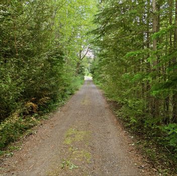 Residential Freehold 20822 ON-48 Highway East Gwillimbury For {
  "AboveGradeFinishedArea": 0,
  "AboveGradeFinishedAreaSource": "",
  "AboveGradeFinishedAreaUnits": "",
  "Acreage": "10-24.99",
  "Active": true,
  "Address": "20822 ON-48 Highway",
  "AirConditioning": "Central Air",
  "AirConditioningYN": false,
  "Amps": "",
  "Appliances": "",
  "ApproxAge": "",
  "ApproxSquareFootage": "1500-2000",
  "Area": "York",
  "AssessmentYear": "",
  "AssignmentYN": false,
  "AssociationAmenities": "",
  "AssociationFee": "",
  "AssociationFeeIncludes": "",
  "AssociationName": "",
  "AssociationYN": false,
  "Balcony": "",
  "Basement": "Finished with Walk-Out",
  "BasementYN": false,
  "BathroomsFull": 0,
  "BathroomsHalf": 0,
  "Bedrooms": 3,
  "BedroomsDisplay": "3",
  "BedroomsPlus": 0,
  "BedroomsTotal": 3,
  "BelowGradeFinishedArea": 0,
  "BelowGradeFinishedAreaSource": "",
  "BelowGradeFinishedAreaUnits": "",
  "Board": "Toronto Regional Real Estate Board",
  "BuilderName": "",
  "BuildingAreaTotal": "",
  "BuildingAreaUnits": "",
  "BuildingName": "",
  "BusinessName": "",
  "BusinessType": "",
  "BuyerAgencyCompensation": "2.5% + HST",
  "BuyerAgencyCompensationType": "",
  "BuyerAgentAOR": "",
  "BuyerAgentEmail": "",
  "BuyerAgentFullName": "",
  "BuyerAgentId": "",
  "BuyerAgentMlsId": "",
  "BuyerAgentPhone": "",
  "BuyerOfficeId": "",
  "BuyerOfficeMlsId": "",
  "BuyerOfficeName": "",
  "BuyerOfficePhone": "",
  "CarportSpaces": 0,
  "Category": "MLS",
  "ChattelsYN": false,
  "City": "East Gwillimbury",
  "ClassSearch": "Residential",
  "ClosedDate": "0001-01-01T00:00:00",
  "CoListAgentDesignation": "",
  "CoListAgentEmail": "",
  "CoListAgentID": "",
  "CoListAgentMLSID": "",
  "CoListAgentName": "",
  "CoListAgentPhone": "",
  "CoListOfficeID": "248506",
  "CoListOfficeMLSID": "248506",
  "CoListOfficeName": "CENTURY 21 HERITAGE GROUP LTD.",
  "CommercialCondoFee": "",
  "CommercialCondoFeeFrequency": "",
  "CommercialCondoFees": "",
  "Commission": "2.5% + HST",
  "Community": "Rural East Gwillimbury",
  "CommunityFeatures": "",
  "Condition": "",
  "ConditionalExpiryDate": "0001-01-01T00:00:00",
  "ConditionOfSale": "",
  "CondoCorpNumber": "",
  "ConsentToAdvertiseYN": true,
  "ConstructionMaterials": "Board & Batten ",
  "ContactAfterExpiryYN": false,
  "ContractDate": "2026-09-25T00:00:00",
  "Cooling": "Central Air",
  "CoolingYN": false,
  "Country": "CA",
  "CoverPhoto": "https://media.remarketer.ca/PROPTX/N13832044-1.jpg?tr=di-propertynoimage_pj5ksb5iM,f-jpg,q-90",
  "CrossStreet": "Mount Albert Rd / HWY 48",
  "DaysOnMarket": 0,
  "DepositRequired": "",
  "Directions": "Mount Albert Rd / HWY 48",
  "Disclosures": "",
  "DisplayAddress": "20822 ON-48 Highway",
  "DisplayAddressYN": true,
  "DistributeToInternetYN": true,
  "Drive": "",
  "Electric": "",
  "ElectricExpense": "",
  "ElectricOnPropertyYN": false,
  "ElectricYN": false,
  "ElementarySchool": "",
  "ElevatorYN": false,
  "Exclusions": "Home Theatre Speakers",
  "Expenses": "",
  "ExpiryDate": "2027-01-25T00:00:00",
  "Exposure": "",
  "Exterior": "",
  "ExteriorFeatures": "",
  "Extras": "",
  "FamilyRoom": "",
  "FireplaceTotal": 0,
  "FireplaceYN": true,
  "Flooring": "",
  "FloorPlans": "",
  "FoundationDetails": "Poured Concrete",
  "Franchise": "",
  "FranchiseYN": false,
  "FurnishedYN": false,
  "GarageSpaces": 0,
  "GarageType": "None",
  "GarageYN": false,
  "GasYN": false,
  "Geometry": {
    "lat": 44.1355,
    "lon": -79.5009
  },
  "GymYN": false,
  "HeatingYN": false,
  "HeatSource": "Electric",
  "HeatType": "Forced Air",
  "HighSchool": "",
  "HoldoverDays": "90",
  "id": "N13832044_PROPTX",
  "IDX": "Y",
  "IDXYN": true,
  "Inclusions": "All existing appliances, all existing light fixtures, all existing window coverings, hot water tank (owned), New roof installed on the North and South side of the house (2026)",
  "InteriorFeatures": "Carpet Free",
  "Kitchens": 1,
  "KitchensPlus": 0,
  "LandLeaseAmount": "",
  "LandLeaseYN": false,
  "LastStatus": "New",
  "Latitude": 44.1355,
  "LaundryFeatures": "",
  "LaundryLevel": "Main Level",
  "Lease": "",
  "LeaseAgreement": "",
  "LeaseAgreementYN": false,
  "LeaseFrequency": "",
  "LeaseTerm": "",
  "LegalDescription": "",
  "Level": "",
  "ListAgentDesignation": "",
  "ListAgentEmail": "",
  "ListAgentID": "9546639",
  "ListAgentMLSID": "9546639",
  "ListAgentName": "PETER FERRAGINE, Salesperson",
  "ListAgentPhone": "",
  "ListAOR": "Toronto Regional Real Estate Board",
  "ListBrokerage": "CENTURY 21 HERITAGE GROUP LTD.",
  "ListingEntryDate": "2026-09-26T17:00:09",
  "ListingId": "N13832044",
  "ListingKey": "N13832044",
  "ListOfficeID": "248506",
  "ListOfficeMLSID": "248506",
  "ListOfficePhone": "",
  "ListPrice": 1749900,
  "ListPricePerUnit": 0,
  "ListPriceUnit": "",
  "LivingArea": "1500-2000",
  "LivingAreaSource": "",
  "LivingAreaUnits": "",
  "Locker": "",
  "Longitude": -79.5009,
  "LotDepth": 3181,
  "LotFeatures": "",
  "LotFront": 334,
  "LotIrregularities": "",
  "LotShape": "Irregular",
  "LotSizeArea": "",
  "LotSizeAreaUnits": "",
  "LotSizeCode": "Feet",
  "LotSizeDimensions": "",
  "Maintenance": "",
  "Media": [
    {
      "id": "215cc197-ad74-4cc2-8e6a-d32c279ef692-nw_PROPTX",
      "ListingId": "N13832044",
      "ListingKey": "N13832044",
      "MediaId": "215cc197-ad74-4cc2-8e6a-d32c279ef692-nw",
      "ModificationTimestamp": "2026-09-26T17:00:09",
      "MediaOrder": 1,
      "Active": true,
      "MediaSize": "",
      "ResourceName": "Property",
      "ClassName": "ResidentialFree",
      "MediaDescription": "",
      "PreferredPhotoYN": true,
      "WaterMarkYN": false,
      "MediaName": "",
      "MediaCategory": "Photo",
      "MediaHTML": "",
      "MediaType": "image/jpeg",
      "MediaUrl": "https://trreb-image.ampre.ca/kinCb8f7eJzxrWXEww72ntRtUDNfiC35oI-SnGHT9gY/rs:fit:3840:3840/L3RycmViL2xpc3RpbmdzLzQ0LzExLzYyLzg1L3AvODA2YzdiZWQtNTNkNy00Mjk3LTk1MDMtMDBiM2MxMTljMDdmLmpwZw.jpg",
      "MediaWidth": "3200",
      "MediaHeight": "2400",
      "MediaStatus": "Active",
      "Source": "PROPTX",
      "OriginatingSystemName": "",
      "RTimestampSql": "2026-09-26T17:05:20.6"
    },
    {
      "id": "58557a5a-eded-42aa-bd5f-4d99fe95cdf8-nw_PROPTX",
      "ListingId": "N13832044",
      "ListingKey": "N13832044",
      "MediaId": "58557a5a-eded-42aa-bd5f-4d99fe95cdf8-nw",
      "ModificationTimestamp": "2026-09-26T17:00:09",
      "MediaOrder": 2,
      "Active": true,
      "MediaSize": "",
      "ResourceName": "Property",
      "ClassName": "ResidentialFree",
      "MediaDescription": "",
      "PreferredPhotoYN": false,
      "WaterMarkYN": false,
      "MediaName": "",
      "MediaCategory": "Photo",
      "MediaHTML": "",
      "MediaType": "image/jpeg",
      "MediaUrl": "https://trreb-image.ampre.ca/WOMF-RGFYJhLEmPQ_e40dMWvgwUAovVEu8laf8dTumg/rs:fit:3840:3840/L3RycmViL2xpc3RpbmdzLzQ0LzExLzYyLzg1L3AvZDI0NjgzZmMtM2E5NS00ZmFlLWJlOWUtODJiY2JjM2M5OWQ1LmpwZw.jpg",
      "MediaWidth": "3200",
      "MediaHeight": "2400",
      "MediaStatus": "Active",
      "Source": "PROPTX",
      "OriginatingSystemName": "",
      "RTimestampSql": "2026-09-26T17:05:20.787"
    },
    {
      "id": "1a1facae-9e2e-4370-aaec-8023de32ec1a-nw_PROPTX",
      "ListingId": "N13832044",
      "ListingKey": "N13832044",
      "MediaId": "1a1facae-9e2e-4370-aaec-8023de32ec1a-nw",
      "ModificationTimestamp": "2026-09-26T17:00:09",
      "MediaOrder": 3,
      "Active": true,
      "MediaSize": "",
      "ResourceName": "Property",
      "ClassName": "ResidentialFree",
      "MediaDescription": "",
      "PreferredPhotoYN": false,
      "WaterMarkYN": false,
      "MediaName": "",
      "MediaCategory": "Photo",
      "MediaHTML": "",
      "MediaType": "image/jpeg",
      "MediaUrl": "https://trreb-image.ampre.ca/nlNH5Gntbe1Z5ZuxtOlZG5yW7ucBttpBALd7NSXQRww/rs:fit:3840:3840/L3RycmViL2xpc3RpbmdzLzQ0LzExLzYyLzg1L3AvZjM5MTY0ODQtMDhiYy00ZjNkLTg4YTItNTc0OTk1MjgxYzFkLmpwZw.jpg",
      "MediaWidth": "3200",
      "MediaHeight": "2400",
      "MediaStatus": "Active",
      "Source": "PROPTX",
      "OriginatingSystemName": "",
      "RTimestampSql": "2026-09-26T17:05:20.557"
    },
    {
      "id": "c29c0fcf-6ad1-4def-bc64-2f664e02fea4-nw_PROPTX",
      "ListingId": "N13832044",
      "ListingKey": "N13832044",
      "MediaId": "c29c0fcf-6ad1-4def-bc64-2f664e02fea4-nw",
      "ModificationTimestamp": "2026-09-26T17:00:09",
      "MediaOrder": 4,
      "Active": true,
      "MediaSize": "",
      "ResourceName": "Property",
      "ClassName": "ResidentialFree",
      "MediaDescription": "",
      "PreferredPhotoYN": false,
      "WaterMarkYN": false,
      "MediaName": "",
      "MediaCategory": "Photo",
      "MediaHTML": "",
      "MediaType": "image/jpeg",
      "MediaUrl": "https://trreb-image.ampre.ca/QHQdQpQfrXNVWSk5k7_5L21RMIwqtubaO5KniPzvxw4/rs:fit:3840:3840/L3RycmViL2xpc3RpbmdzLzQ0LzExLzYyLzg1L3AvYTg3M2VjYTUtMjA0OS00NmY5LTk2NDAtMzI1NzhkMjY0ZGI4LmpwZw.jpg",
      "MediaWidth": "3200",
      "MediaHeight": "2400",
      "MediaStatus": "Active",
      "Source": "PROPTX",
      "OriginatingSystemName": "",
      "RTimestampSql": "2026-09-26T17:05:21.31"
    },
    {
      "id": "9228117c-a3af-41f0-832a-6afcf30ca4ee-nw_PROPTX",
      "ListingId": "N13832044",
      "ListingKey": "N13832044",
      "MediaId": "9228117c-a3af-41f0-832a-6afcf30ca4ee-nw",
      "ModificationTimestamp": "2026-09-26T17:00:09",
      "MediaOrder": 5,
      "Active": true,
      "MediaSize": "",
      "ResourceName": "Property",
      "ClassName": "ResidentialFree",
      "MediaDescription": "",
      "PreferredPhotoYN": false,
      "WaterMarkYN": false,
      "MediaName": "",
      "MediaCategory": "Photo",
      "MediaHTML": "",
      "MediaType": "image/jpeg",
      "MediaUrl": "https://trreb-image.ampre.ca/nCFmfV79f-vz7NAyayq-nKUCzVd8DFwYZb4S-exCfls/rs:fit:3840:3840/L3RycmViL2xpc3RpbmdzLzQ0LzExLzYyLzg1L3AvMDdiNjkyZjMtYjY3Ny00NGNmLWJlZTUtYTljNmZjNmNmMzk1LmpwZw.jpg",
      "MediaWidth": "3200",
      "MediaHeight": "2400",
      "MediaStatus": "Active",
      "Source": "PROPTX",
      "OriginatingSystemName": "",
      "RTimestampSql": "2026-09-26T17:05:21"
    },
    {
      "id": "711f43d4-2b42-4982-a7b9-fdd9b7f8795c-nw_PROPTX",
      "ListingId": "N13832044",
      "ListingKey": "N13832044",
      "MediaId": "711f43d4-2b42-4982-a7b9-fdd9b7f8795c-nw",
      "ModificationTimestamp": "2026-09-26T17:00:09",
      "MediaOrder": 6,
      "Active": true,
      "MediaSize": "",
      "ResourceName": "Property",
      "ClassName": "ResidentialFree",
      "MediaDescription": "",
      "PreferredPhotoYN": false,
      "WaterMarkYN": false,
      "MediaName": "",
      "MediaCategory": "Photo",
      "MediaHTML": "",
      "MediaType": "image/jpeg",
      "MediaUrl": "https://trreb-image.ampre.ca/bLOAThjb-0b5gl7rEnp3FFaCgPgZc35-AGkzLL48M7M/rs:fit:3840:3840/L3RycmViL2xpc3RpbmdzLzQ0LzExLzYyLzg1L3AvMTIxY2E3NTUtNjU0NS00YzRiLWFmN2EtNmIzNjFmN2NlNTU0LmpwZw.jpg",
      "MediaWidth": "3200",
      "MediaHeight": "2400",
      "MediaStatus": "Active",
      "Source": "PROPTX",
      "OriginatingSystemName": "",
      "RTimestampSql": "2026-09-26T17:05:20.86"
    },
    {
      "id": "2425a6b1-9f22-4588-88a2-c950ba4aec32-nw_PROPTX",
      "ListingId": "N13832044",
      "ListingKey": "N13832044",
      "MediaId": "2425a6b1-9f22-4588-88a2-c950ba4aec32-nw",
      "ModificationTimestamp": "2026-09-26T17:00:09",
      "MediaOrder": 7,
      "Active": true,
      "MediaSize": "",
      "ResourceName": "Property",
      "ClassName": "ResidentialFree",
      "MediaDescription": "",
      "PreferredPhotoYN": false,
      "WaterMarkYN": false,
      "MediaName": "",
      "MediaCategory": "Photo",
      "MediaHTML": "",
      "MediaType": "image/jpeg",
      "MediaUrl": "https://trreb-image.ampre.ca/P1B0q1K6kNy2-lauBVE0hPpf68-ILG_67TtxikBN6Ic/rs:fit:3840:3840/L3RycmViL2xpc3RpbmdzLzQ0LzExLzYyLzg1L3AvOTAxNDM2NjctZjA5OS00YWVhLWIyOWItZGM3ODBjYTdhYjIzLmpwZw.jpg",
      "MediaWidth": "3200",
      "MediaHeight": "2400",
      "MediaStatus": "Active",
      "Source": "PROPTX",
      "OriginatingSystemName": "",
      "RTimestampSql": "2026-09-26T17:05:20.613"
    },
    {
      "id": "7ee8ce97-8e34-4d6a-a0a9-30f615460e24-nw_PROPTX",
      "ListingId": "N13832044",
      "ListingKey": "N13832044",
      "MediaId": "7ee8ce97-8e34-4d6a-a0a9-30f615460e24-nw",
      "ModificationTimestamp": "2026-09-26T17:00:09",
      "MediaOrder": 8,
      "Active": true,
      "MediaSize": "",
      "ResourceName": "Property",
      "ClassName": "ResidentialFree",
      "MediaDescription": "",
      "PreferredPhotoYN": false,
      "WaterMarkYN": false,
      "MediaName": "",
      "MediaCategory": "Photo",
      "MediaHTML": "",
      "MediaType": "image/jpeg",
      "MediaUrl": "https://trreb-image.ampre.ca/Ko8W-MIlePfck_O8yVmne_BywQem-IRPUmzqOlBjsEE/rs:fit:3840:3840/L3RycmViL2xpc3RpbmdzLzQ0LzExLzYyLzg1L3AvMDZhNjEwMGEtMzA0OS00NmExLWE1MmYtMDk5ZTE2ZjMyMzA1LmpwZw.jpg",
      "MediaWidth": "3200",
      "MediaHeight": "2400",
      "MediaStatus": "Active",
      "Source": "PROPTX",
      "OriginatingSystemName": "",
      "RTimestampSql": "2026-09-26T17:05:20.91"
    },
    {
      "id": "05f924c3-f590-40a7-835a-3c27ea201321-nw_PROPTX",
      "ListingId": "N13832044",
      "ListingKey": "N13832044",
      "MediaId": "05f924c3-f590-40a7-835a-3c27ea201321-nw",
      "ModificationTimestamp": "2026-09-26T17:00:09",
      "MediaOrder": 9,
      "Active": true,
      "MediaSize": "",
      "ResourceName": "Property",
      "ClassName": "ResidentialFree",
      "MediaDescription": "",
      "PreferredPhotoYN": false,
      "WaterMarkYN": false,
      "MediaName": "",
      "MediaCategory": "Photo",
      "MediaHTML": "",
      "MediaType": "image/jpeg",
      "MediaUrl": "https://trreb-image.ampre.ca/XxFLVxmKARu6VoFStO_yXmpGRH9OjQlse5bg8NyvRiA/rs:fit:3840:3840/L3RycmViL2xpc3RpbmdzLzQ0LzExLzYyLzg1L3AvM2NkYTUyYjItN2E0Ny00YzBhLWE2YTUtZmNlZjQzOTVhODc0LmpwZw.jpg",
      "MediaWidth": "3200",
      "MediaHeight": "2400",
      "MediaStatus": "Active",
      "Source": "PROPTX",
      "OriginatingSystemName": "",
      "RTimestampSql": "2026-09-26T17:05:20.427"
    },
    {
      "id": "062b2d92-0505-46a9-a663-9a47b613df5a-nw_PROPTX",
      "ListingId": "N13832044",
      "ListingKey": "N13832044",
      "MediaId": "062b2d92-0505-46a9-a663-9a47b613df5a-nw",
      "ModificationTimestamp": "2026-09-26T17:00:09",
      "MediaOrder": 10,
      "Active": true,
      "MediaSize": "",
      "ResourceName": "Property",
      "ClassName": "ResidentialFree",
      "MediaDescription": "",
      "PreferredPhotoYN": false,
      "WaterMarkYN": false,
      "MediaName": "",
      "MediaCategory": "Photo",
      "MediaHTML": "",
      "MediaType": "image/jpeg",
      "MediaUrl": "https://trreb-image.ampre.ca/pU07nKSLxHjNFraMRGXL-ZsIQsyQUuwSnyXlxIlVfYQ/rs:fit:3840:3840/L3RycmViL2xpc3RpbmdzLzQ0LzExLzYyLzg1L3AvNzQzYmYxZGUtZjE1Yy00ODEzLTg0MjYtZDEwZjQxNjEyOTg3LmpwZw.jpg",
      "MediaWidth": "3200",
      "MediaHeight": "2400",
      "MediaStatus": "Active",
      "Source": "PROPTX",
      "OriginatingSystemName": "",
      "RTimestampSql": "2026-09-26T17:05:20.443"
    },
    {
      "id": "e8775afe-4bfd-4c24-94e3-d7a6a5aa47d0-nw_PROPTX",
      "ListingId": "N13832044",
      "ListingKey": "N13832044",
      "MediaId": "e8775afe-4bfd-4c24-94e3-d7a6a5aa47d0-nw",
      "ModificationTimestamp": "2026-09-26T17:00:09",
      "MediaOrder": 11,
      "Active": true,
      "MediaSize": "",
      "ResourceName": "Property",
      "ClassName": "ResidentialFree",
      "MediaDescription": "",
      "PreferredPhotoYN": false,
      "WaterMarkYN": false,
      "MediaName": "",
      "MediaCategory": "Photo",
      "MediaHTML": "",
      "MediaType": "image/jpeg",
      "MediaUrl": "https://trreb-image.ampre.ca/jSgTk1IZ8iCjlktwP-H4B1n01fcXsWIS4UcsoPbitPk/rs:fit:3840:3840/L3RycmViL2xpc3RpbmdzLzQ0LzExLzYyLzg1L3AvY2Y3NzQzMDctNGVmYS00YjA2LWJkNjMtZmQ1NjFjZGI0ZTA3LmpwZw.jpg",
      "MediaWidth": "3200",
      "MediaHeight": "2400",
      "MediaStatus": "Active",
      "Source": "PROPTX",
      "OriginatingSystemName": "",
      "RTimestampSql": "2026-09-26T17:05:21.417"
    },
    {
      "id": "948d0462-fd50-4f15-b408-9f21cde83df1-nw_PROPTX",
      "ListingId": "N13832044",
      "ListingKey": "N13832044",
      "MediaId": "948d0462-fd50-4f15-b408-9f21cde83df1-nw",
      "ModificationTimestamp": "2026-09-26T17:00:09",
      "MediaOrder": 12,
      "Active": true,
      "MediaSize": "",
      "ResourceName": "Property",
      "ClassName": "ResidentialFree",
      "MediaDescription": "",
      "PreferredPhotoYN": false,
      "WaterMarkYN": false,
      "MediaName": "",
      "MediaCategory": "Photo",
      "MediaHTML": "",
      "MediaType": "image/jpeg",
      "MediaUrl": "https://trreb-image.ampre.ca/4JrGj6kvVMZSz0dMVtURvq5SF1e7dCMoldB4jjFgM8Y/rs:fit:3840:3840/L3RycmViL2xpc3RpbmdzLzQ0LzExLzYyLzg1L3AvZjY2NmJkMzgtOGY2Yy00NDA4LTlmZjAtNTUxZTlhNGMzNjgxLmpwZw.jpg",
      "MediaWidth": "3200",
      "MediaHeight": "2400",
      "MediaStatus": "Active",
      "Source": "PROPTX",
      "OriginatingSystemName": "",
      "RTimestampSql": "2026-09-26T17:05:21.047"
    },
    {
      "id": "1be90162-3a85-49ed-888d-e33512ff2dc1-nw_PROPTX",
      "ListingId": "N13832044",
      "ListingKey": "N13832044",
      "MediaId": "1be90162-3a85-49ed-888d-e33512ff2dc1-nw",
      "ModificationTimestamp": "2026-09-26T17:00:09",
      "MediaOrder": 13,
      "Active": true,
      "MediaSize": "",
      "ResourceName": "Property",
      "ClassName": "ResidentialFree",
      "MediaDescription": "",
      "PreferredPhotoYN": false,
      "WaterMarkYN": false,
      "MediaName": "",
      "MediaCategory": "Photo",
      "MediaHTML": "",
      "MediaType": "image/jpeg",
      "MediaUrl": "https://trreb-image.ampre.ca/JlmA_XrUe5VW86SWKA22wILQoQQEfu1hfcqaAWX1v2M/rs:fit:3840:3840/L3RycmViL2xpc3RpbmdzLzQ0LzExLzYyLzg1L3AvMzM3MTIzNWQtNzY4ZC00ZDk1LTk3Y2UtZGJlY2U5NzI2MTMwLmpwZw.jpg",
      "MediaWidth": "3200",
      "MediaHeight": "2400",
      "MediaStatus": "Active",
      "Source": "PROPTX",
      "OriginatingSystemName": "",
      "RTimestampSql": "2026-09-26T17:05:20.58"
    },
    {
      "id": "6b4c8d5c-8c69-476b-890c-e5f9ac1ed499-nw_PROPTX",
      "ListingId": "N13832044",
      "ListingKey": "N13832044",
      "MediaId": "6b4c8d5c-8c69-476b-890c-e5f9ac1ed499-nw",
      "ModificationTimestamp": "2026-09-26T17:00:09",
      "MediaOrder": 14,
      "Active": true,
      "MediaSize": "",
      "ResourceName": "Property",
      "ClassName": "ResidentialFree",
      "MediaDescription": "",
      "PreferredPhotoYN": false,
      "WaterMarkYN": false,
      "MediaName": "",
      "MediaCategory": "Photo",
      "MediaHTML": "",
      "MediaType": "image/jpeg",
      "MediaUrl": "https://trreb-image.ampre.ca/O--C22eobdDC_wFPg1GPaeiT91wi5i9GN8EiAvB_w-4/rs:fit:3840:3840/L3RycmViL2xpc3RpbmdzLzQ0LzExLzYyLzg1L3AvM2E2ODY4ODMtNjFkMi00ZDM0LThlYjYtZWMxMzc4N2JlNjc0LmpwZw.jpg",
      "MediaWidth": "3200",
      "MediaHeight": "2400",
      "MediaStatus": "Active",
      "Source": "PROPTX",
      "OriginatingSystemName": "",
      "RTimestampSql": "2026-09-26T17:05:20.843"
    },
    {
      "id": "9b202b82-ea99-4c11-82eb-36b8a35e21e8-nw_PROPTX",
      "ListingId": "N13832044",
      "ListingKey": "N13832044",
      "MediaId": "9b202b82-ea99-4c11-82eb-36b8a35e21e8-nw",
      "ModificationTimestamp": "2026-09-26T17:00:09",
      "MediaOrder": 15,
      "Active": true,
      "MediaSize": "",
      "ResourceName": "Property",
      "ClassName": "ResidentialFree",
      "MediaDescription": "",
      "PreferredPhotoYN": false,
      "WaterMarkYN": false,
      "MediaName": "",
      "MediaCategory": "Photo",
      "MediaHTML": "",
      "MediaType": "image/jpeg",
      "MediaUrl": "https://trreb-image.ampre.ca/qLsbjgw5ECpGtAnPuM6x406ANEdFlp2UnQ-cOcH-xwA/rs:fit:3840:3840/L3RycmViL2xpc3RpbmdzLzQ0LzExLzYyLzg1L3AvMWIzYjY0ZjYtOGMzOC00NjM0LTgzYzEtOTE0MzJhY2FlYjEwLmpwZw.jpg",
      "MediaWidth": "3200",
      "MediaHeight": "2400",
      "MediaStatus": "Active",
      "Source": "PROPTX",
      "OriginatingSystemName": "",
      "RTimestampSql": "2026-09-26T17:05:21.1"
    },
    {
      "id": "67244995-c3dd-441b-b622-f75fee1a67a8-nw_PROPTX",
      "ListingId": "N13832044",
      "ListingKey": "N13832044",
      "MediaId": "67244995-c3dd-441b-b622-f75fee1a67a8-nw",
      "ModificationTimestamp": "2026-09-26T17:00:09",
      "MediaOrder": 16,
      "Active": true,
      "MediaSize": "",
      "ResourceName": "Property",
      "ClassName": "ResidentialFree",
      "MediaDescription": "",
      "PreferredPhotoYN": false,
      "WaterMarkYN": false,
      "MediaName": "",
      "MediaCategory": "Photo",
      "MediaHTML": "",
      "MediaType": "image/jpeg",
      "MediaUrl": "https://trreb-image.ampre.ca/43va75KolbfI_gCNkOpeCT918G7rhhSXvma6pGDUgPk/rs:fit:3840:3840/L3RycmViL2xpc3RpbmdzLzQ0LzExLzYyLzg1L3AvYjkwMjQzODUtNzFkYi00YmE4LWE0OTMtMWVjNDNlNzA2NTAwLmpwZw.jpg",
      "MediaWidth": "3200",
      "MediaHeight": "2400",
      "MediaStatus": "Active",
      "Source": "PROPTX",
      "OriginatingSystemName": "",
      "RTimestampSql": "2026-09-26T17:05:20.807"
    },
    {
      "id": "561b590f-6ded-4f5d-bff4-2b83d8a6cd68-nw_PROPTX",
      "ListingId": "N13832044",
      "ListingKey": "N13832044",
      "MediaId": "561b590f-6ded-4f5d-bff4-2b83d8a6cd68-nw",
      "ModificationTimestamp": "2026-09-26T17:00:09",
      "MediaOrder": 17,
      "Active": true,
      "MediaSize": "",
      "ResourceName": "Property",
      "ClassName": "ResidentialFree",
      "MediaDescription": "",
      "PreferredPhotoYN": false,
      "WaterMarkYN": false,
      "MediaName": "",
      "MediaCategory": "Photo",
      "MediaHTML": "",
      "MediaType": "image/jpeg",
      "MediaUrl": "https://trreb-image.ampre.ca/DEIxsmtc610yS0CFeJphkO_O88dey64AsRCSMhJmRmw/rs:fit:3840:3840/L3RycmViL2xpc3RpbmdzLzQ0LzExLzYyLzg1L3AvNWY4OWY5NDgtMGRlOS00YWE4LWIwZjctNDEzNzc1ODc0YjEyLmpwZw.jpg",
      "MediaWidth": "3200",
      "MediaHeight": "2400",
      "MediaStatus": "Active",
      "Source": "PROPTX",
      "OriginatingSystemName": "",
      "RTimestampSql": "2026-09-26T17:05:20.767"
    },
    {
      "id": "8a13fcd7-60ef-42a7-8694-c9dc0652056c-nw_PROPTX",
      "ListingId": "N13832044",
      "ListingKey": "N13832044",
      "MediaId": "8a13fcd7-60ef-42a7-8694-c9dc0652056c-nw",
      "ModificationTimestamp": "2026-09-26T17:00:09",
      "MediaOrder": 18,
      "Active": true,
      "MediaSize": "",
      "ResourceName": "Property",
      "ClassName": "ResidentialFree",
      "MediaDescription": "",
      "PreferredPhotoYN": false,
      "WaterMarkYN": false,
      "MediaName": "",
      "MediaCategory": "Photo",
      "MediaHTML": "",
      "MediaType": "image/jpeg",
      "MediaUrl": "https://trreb-image.ampre.ca/j6rCYjL66XoHYDZCoLHJgWuvXGJZ3MUObeQW78Xvotc/rs:fit:3840:3840/L3RycmViL2xpc3RpbmdzLzQ0LzExLzYyLzg1L3AvNjkyNzdhMTItN2MxZS00OThhLTg4YjMtYTE4MmMwNjc1NmI0LmpwZw.jpg",
      "MediaWidth": "3200",
      "MediaHeight": "2400",
      "MediaStatus": "Active",
      "Source": "PROPTX",
      "OriginatingSystemName": "",
      "RTimestampSql": "2026-09-26T17:05:20.987"
    },
    {
      "id": "c31cac05-e068-4c52-baa6-195c5d2f9095-nw_PROPTX",
      "ListingId": "N13832044",
      "ListingKey": "N13832044",
      "MediaId": "c31cac05-e068-4c52-baa6-195c5d2f9095-nw",
      "ModificationTimestamp": "2026-09-26T17:00:09",
      "MediaOrder": 19,
      "Active": true,
      "MediaSize": "",
      "ResourceName": "Property",
      "ClassName": "ResidentialFree",
      "MediaDescription": "",
      "PreferredPhotoYN": false,
      "WaterMarkYN": false,
      "MediaName": "",
      "MediaCategory": "Photo",
      "MediaHTML": "",
      "MediaType": "image/jpeg",
      "MediaUrl": "https://trreb-image.ampre.ca/GWLUFi0hn6WnlI9lbsGDQGxUN-11v9aCpAqykdrS4YY/rs:fit:3840:3840/L3RycmViL2xpc3RpbmdzLzQ0LzExLzYyLzg1L3AvYmJkMTUyMWMtYTUzYi00OTNiLWIwZTItYjk4ZGU4MjllMDQ0LmpwZw.jpg",
      "MediaWidth": "3200",
      "MediaHeight": "2400",
      "MediaStatus": "Active",
      "Source": "PROPTX",
      "OriginatingSystemName": "",
      "RTimestampSql": "2026-09-26T17:05:21.323"
    },
    {
      "id": "89494a25-32fe-48c3-b0f3-80e030d89234-nw_PROPTX",
      "ListingId": "N13832044",
      "ListingKey": "N13832044",
      "MediaId": "89494a25-32fe-48c3-b0f3-80e030d89234-nw",
      "ModificationTimestamp": "2026-09-26T17:00:09",
      "MediaOrder": 20,
      "Active": true,
      "MediaSize": "",
      "ResourceName": "Property",
      "ClassName": "ResidentialFree",
      "MediaDescription": "",
      "PreferredPhotoYN": false,
      "WaterMarkYN": false,
      "MediaName": "",
      "MediaCategory": "Photo",
      "MediaHTML": "",
      "MediaType": "image/jpeg",
      "MediaUrl": "https://trreb-image.ampre.ca/_QwN1u931oO1ZeD8N8_3P480lVjMnpAU6MfaBmSuXOc/rs:fit:3840:3840/L3RycmViL2xpc3RpbmdzLzQ0LzExLzYyLzg1L3AvNjRiNDYzMTAtZjNhNS00ZGRlLTg0NDQtZWYxZGY3NDgxZGUyLmpwZw.jpg",
      "MediaWidth": "3200",
      "MediaHeight": "2400",
      "MediaStatus": "Active",
      "Source": "PROPTX",
      "OriginatingSystemName": "",
      "RTimestampSql": "2026-09-26T17:05:20.953"
    },
    {
      "id": "a230d54d-31e4-4582-834b-d8c98167a72b-nw_PROPTX",
      "ListingId": "N13832044",
      "ListingKey": "N13832044",
      "MediaId": "a230d54d-31e4-4582-834b-d8c98167a72b-nw",
      "ModificationTimestamp": "2026-09-26T17:00:09",
      "MediaOrder": 21,
      "Active": true,
      "MediaSize": "",
      "ResourceName": "Property",
      "ClassName": "ResidentialFree",
      "MediaDescription": "",
      "PreferredPhotoYN": false,
      "WaterMarkYN": false,
      "MediaName": "",
      "MediaCategory": "Photo",
      "MediaHTML": "",
      "MediaType": "image/jpeg",
      "MediaUrl": "https://trreb-image.ampre.ca/4ZUPXeQ5sbVYeFR7x0vuXYQ-LYOWZHIYLri2mKK-Z_E/rs:fit:3840:3840/L3RycmViL2xpc3RpbmdzLzQ0LzExLzYyLzg1L3AvZjM0MzVhZDgtZGI5Ny00ZDNiLTlhMTMtY2E3Y2FkZjRhZTU2LmpwZw.jpg",
      "MediaWidth": "3200",
      "MediaHeight": "2400",
      "MediaStatus": "Active",
      "Source": "PROPTX",
      "OriginatingSystemName": "",
      "RTimestampSql": "2026-09-26T17:05:21.147"
    },
    {
      "id": "c4c53035-734d-4171-9e0d-c6363577d39a-nw_PROPTX",
      "ListingId": "N13832044",
      "ListingKey": "N13832044",
      "MediaId": "c4c53035-734d-4171-9e0d-c6363577d39a-nw",
      "ModificationTimestamp": "2026-09-26T17:00:09",
      "MediaOrder": 22,
      "Active": true,
      "MediaSize": "",
      "ResourceName": "Property",
      "ClassName": "ResidentialFree",
      "MediaDescription": "",
      "PreferredPhotoYN": false,
      "WaterMarkYN": false,
      "MediaName": "",
      "MediaCategory": "Photo",
      "MediaHTML": "",
      "MediaType": "image/jpeg",
      "MediaUrl": "https://trreb-image.ampre.ca/Gwcof4MyZ2xh_U5HYa-ZK5ep9lWunvIxyCzd7bN7vEA/rs:fit:3840:3840/L3RycmViL2xpc3RpbmdzLzQ0LzExLzYyLzg1L3AvNGNjMTUyNmMtYzA0YS00NDVmLTlkNmYtOGVmYzVhZmIxZmZiLmpwZw.jpg",
      "MediaWidth": "3200",
      "MediaHeight": "2400",
      "MediaStatus": "Active",
      "Source": "PROPTX",
      "OriginatingSystemName": "",
      "RTimestampSql": "2026-09-26T17:05:21.34"
    },
    {
      "id": "e41fb99a-ae96-43d3-b249-7731d9511ee2-nw_PROPTX",
      "ListingId": "N13832044",
      "ListingKey": "N13832044",
      "MediaId": "e41fb99a-ae96-43d3-b249-7731d9511ee2-nw",
      "ModificationTimestamp": "2026-09-26T17:00:09",
      "MediaOrder": 23,
      "Active": true,
      "MediaSize": "",
      "ResourceName": "Property",
      "ClassName": "ResidentialFree",
      "MediaDescription": "",
      "PreferredPhotoYN": false,
      "WaterMarkYN": false,
      "MediaName": "",
      "MediaCategory": "Photo",
      "MediaHTML": "",
      "MediaType": "image/jpeg",
      "MediaUrl": "https://trreb-image.ampre.ca/kXk_kgY-ReLvb1Yg7lyq71Yky5nob3GlKAhABLnvGGE/rs:fit:3840:3840/L3RycmViL2xpc3RpbmdzLzQ0LzExLzYyLzg1L3AvMTcwNjVjZjQtYjU1Yi00MDYwLThkZjktM2NmNjEwNzZkYWE0LmpwZw.jpg",
      "MediaWidth": "3200",
      "MediaHeight": "2400",
      "MediaStatus": "Active",
      "Source": "PROPTX",
      "OriginatingSystemName": "",
      "RTimestampSql": "2026-09-26T17:05:21.397"
    },
    {
      "id": "3c89fdab-cd2e-4b9d-b9a4-9bedf5687a51-nw_PROPTX",
      "ListingId": "N13832044",
      "ListingKey": "N13832044",
      "MediaId": "3c89fdab-cd2e-4b9d-b9a4-9bedf5687a51-nw",
      "ModificationTimestamp": "2026-09-26T17:00:09",
      "MediaOrder": 24,
      "Active": true,
      "MediaSize": "",
      "ResourceName": "Property",
      "ClassName": "ResidentialFree",
      "MediaDescription": "",
      "PreferredPhotoYN": false,
      "WaterMarkYN": false,
      "MediaName": "",
      "MediaCategory": "Photo",
      "MediaHTML": "",
      "MediaType": "image/jpeg",
      "MediaUrl": "https://trreb-image.ampre.ca/BTUA1jLTQoCZvNBQxaMixPNf_CRlRII2PA2Ov36FLGc/rs:fit:3840:3840/L3RycmViL2xpc3RpbmdzLzQ0LzExLzYyLzg1L3AvYTI0MTA5MzUtYThhYi00MjU3LWIzMDctOGRlZmM4OTQ2YzExLmpwZw.jpg",
      "MediaWidth": "3200",
      "MediaHeight": "2400",
      "MediaStatus": "Active",
      "Source": "PROPTX",
      "OriginatingSystemName": "",
      "RTimestampSql": "2026-09-26T17:05:20.69"
    },
    {
      "id": "938eaa91-686f-46e5-9302-305c5865f184-nw_PROPTX",
      "ListingId": "N13832044",
      "ListingKey": "N13832044",
      "MediaId": "938eaa91-686f-46e5-9302-305c5865f184-nw",
      "ModificationTimestamp": "2026-09-26T17:00:09",
      "MediaOrder": 25,
      "Active": true,
      "MediaSize": "",
      "ResourceName": "Property",
      "ClassName": "ResidentialFree",
      "MediaDescription": "",
      "PreferredPhotoYN": false,
      "WaterMarkYN": false,
      "MediaName": "",
      "MediaCategory": "Photo",
      "MediaHTML": "",
      "MediaType": "image/jpeg",
      "MediaUrl": "https://trreb-image.ampre.ca/0YhD2h3NbNGam2HGvQoUVpgDx-nDj-Lj4DjKTMEQeTQ/rs:fit:3840:3840/L3RycmViL2xpc3RpbmdzLzQ0LzExLzYyLzg1L3AvMjg0MmYwNzYtZGZiMi00ZDQwLTg3NjctZTkwZDhhNGIzN2EzLmpwZw.jpg",
      "MediaWidth": "3200",
      "MediaHeight": "2400",
      "MediaStatus": "Active",
      "Source": "PROPTX",
      "OriginatingSystemName": "",
      "RTimestampSql": "2026-09-26T17:05:21.03"
    },
    {
      "id": "3d86e6fe-2a30-4850-a951-43081f472914-nw_PROPTX",
      "ListingId": "N13832044",
      "ListingKey": "N13832044",
      "MediaId": "3d86e6fe-2a30-4850-a951-43081f472914-nw",
      "ModificationTimestamp": "2026-09-26T17:00:09",
      "MediaOrder": 26,
      "Active": true,
      "MediaSize": "",
      "ResourceName": "Property",
      "ClassName": "ResidentialFree",
      "MediaDescription": "",
      "PreferredPhotoYN": false,
      "WaterMarkYN": false,
      "MediaName": "",
      "MediaCategory": "Photo",
      "MediaHTML": "",
      "MediaType": "image/jpeg",
      "MediaUrl": "https://trreb-image.ampre.ca/Ny4k24PQqs-V0Mu8aoXlnUR7pWLnzBTMfe4NhBCsm_g/rs:fit:3840:3840/L3RycmViL2xpc3RpbmdzLzQ0LzExLzYyLzg1L3AvODk5MGMxZjctY2U4Yi00YjA2LTg3MmEtZmIzZDU1ZTQwNWYzLmpwZw.jpg",
      "MediaWidth": "3200",
      "MediaHeight": "2400",
      "MediaStatus": "Active",
      "Source": "PROPTX",
      "OriginatingSystemName": "",
      "RTimestampSql": "2026-09-26T17:05:20.71"
    },
    {
      "id": "7284bb32-f210-4a82-9b90-09ac700c20e7-nw_PROPTX",
      "ListingId": "N13832044",
      "ListingKey": "N13832044",
      "MediaId": "7284bb32-f210-4a82-9b90-09ac700c20e7-nw",
      "ModificationTimestamp": "2026-09-26T17:00:09",
      "MediaOrder": 27,
      "Active": true,
      "MediaSize": "",
      "ResourceName": "Property",
      "ClassName": "ResidentialFree",
      "MediaDescription": "",
      "PreferredPhotoYN": false,
      "WaterMarkYN": false,
      "MediaName": "",
      "MediaCategory": "Photo",
      "MediaHTML": "",
      "MediaType": "image/jpeg",
      "MediaUrl": "https://trreb-image.ampre.ca/VRiXX0BRRSUhIBUm9YeRX2q64_6WihBseF6hrcB7N4o/rs:fit:3840:3840/L3RycmViL2xpc3RpbmdzLzQ0LzExLzYyLzg1L3AvYWVjNTI1ZDAtMDk0MC00OTQ2LWFiZmQtZDNlODU0NzFlMDRjLmpwZw.jpg",
      "MediaWidth": "3200",
      "MediaHeight": "2400",
      "MediaStatus": "Active",
      "Source": "PROPTX",
      "OriginatingSystemName": "",
      "RTimestampSql": "2026-09-26T17:05:20.873"
    },
    {
      "id": "031302c5-422d-4f3d-8fd7-b957aadc9339-nw_PROPTX",
      "ListingId": "N13832044",
      "ListingKey": "N13832044",
      "MediaId": "031302c5-422d-4f3d-8fd7-b957aadc9339-nw",
      "ModificationTimestamp": "2026-09-26T17:00:09",
      "MediaOrder": 28,
      "Active": true,
      "MediaSize": "",
      "ResourceName": "Property",
      "ClassName": "ResidentialFree",
      "MediaDescription": "",
      "PreferredPhotoYN": false,
      "WaterMarkYN": false,
      "MediaName": "",
      "MediaCategory": "Photo",
      "MediaHTML": "",
      "MediaType": "image/jpeg",
      "MediaUrl": "https://trreb-image.ampre.ca/FoVqeKbOsVLqUUAB85kx2gJI6IM2RnJ3jCM1NFWpatw/rs:fit:3840:3840/L3RycmViL2xpc3RpbmdzLzQ0LzExLzYyLzg1L3AvZDg0M2NkMWYtOGM1Yi00MDg1LThlNDEtYTgwMzFhOGIwNjkyLmpwZw.jpg",
      "MediaWidth": "3200",
      "MediaHeight": "2400",
      "MediaStatus": "Active",
      "Source": "PROPTX",
      "OriginatingSystemName": "",
      "RTimestampSql": "2026-09-26T17:05:20.407"
    },
    {
      "id": "99655c7a-8a97-4d76-9294-194f4b4d157d-nw_PROPTX",
      "ListingId": "N13832044",
      "ListingKey": "N13832044",
      "MediaId": "99655c7a-8a97-4d76-9294-194f4b4d157d-nw",
      "ModificationTimestamp": "2026-09-26T17:00:09",
      "MediaOrder": 29,
      "Active": true,
      "MediaSize": "",
      "ResourceName": "Property",
      "ClassName": "ResidentialFree",
      "MediaDescription": "",
      "PreferredPhotoYN": false,
      "WaterMarkYN": false,
      "MediaName": "",
      "MediaCategory": "Photo",
      "MediaHTML": "",
      "MediaType": "image/jpeg",
      "MediaUrl": "https://trreb-image.ampre.ca/b1RphtgVFpzBy1OuTkXZ4MiVWiDcdQ0GftA0sFFh4xk/rs:fit:3840:3840/L3RycmViL2xpc3RpbmdzLzQ0LzExLzYyLzg1L3AvYjQ2NmI4ZmUtMDA1Yi00ZjJiLTkzMzktMjZkYWJmODhmOTQ1LmpwZw.jpg",
      "MediaWidth": "3200",
      "MediaHeight": "2400",
      "MediaStatus": "Active",
      "Source": "PROPTX",
      "OriginatingSystemName": "",
      "RTimestampSql": "2026-09-26T17:05:21.07"
    },
    {
      "id": "391e2479-40e3-4a00-9d68-7fced7d085d8-nw_PROPTX",
      "ListingId": "N13832044",
      "ListingKey": "N13832044",
      "MediaId": "391e2479-40e3-4a00-9d68-7fced7d085d8-nw",
      "ModificationTimestamp": "2026-09-26T17:00:09",
      "MediaOrder": 30,
      "Active": true,
      "MediaSize": "",
      "ResourceName": "Property",
      "ClassName": "ResidentialFree",
      "MediaDescription": "",
      "PreferredPhotoYN": false,
      "WaterMarkYN": false,
      "MediaName": "",
      "MediaCategory": "Photo",
      "MediaHTML": "",
      "MediaType": "image/jpeg",
      "MediaUrl": "https://trreb-image.ampre.ca/HcknVwqFrVA9Hu0Zbj_u-dvIS-p3qCVFqSJqfdv655M/rs:fit:3840:3840/L3RycmViL2xpc3RpbmdzLzQ0LzExLzYyLzg1L3AvNWJkM2M0OWMtMjVlMi00MzhjLWI2MWQtZWQ1MmMxNDA5ODg2LmpwZw.jpg",
      "MediaWidth": "3200",
      "MediaHeight": "2400",
      "MediaStatus": "Active",
      "Source": "PROPTX",
      "OriginatingSystemName": "",
      "RTimestampSql": "2026-09-26T17:05:20.67"
    },
    {
      "id": "54cc008b-e2e2-4932-a01d-2944c988fc8e-nw_PROPTX",
      "ListingId": "N13832044",
      "ListingKey": "N13832044",
      "MediaId": "54cc008b-e2e2-4932-a01d-2944c988fc8e-nw",
      "ModificationTimestamp": "2026-09-26T17:00:09",
      "MediaOrder": 31,
      "Active": true,
      "MediaSize": "",
      "ResourceName": "Property",
      "ClassName": "ResidentialFree",
      "MediaDescription": "",
      "PreferredPhotoYN": false,
      "WaterMarkYN": false,
      "MediaName": "",
      "MediaCategory": "Photo",
      "MediaHTML": "",
      "MediaType": "image/jpeg",
      "MediaUrl": "https://trreb-image.ampre.ca/jtVVzZkkr4WSBymk8Wqj2sb8PNRlpcjWDKoSEBJJOlQ/rs:fit:3840:3840/L3RycmViL2xpc3RpbmdzLzQ0LzExLzYyLzg1L3AvODkyNjhhMTMtODA0NS00Mzg2LWJiM2MtYTdiNjA0MGJkOGE1LmpwZw.jpg",
      "MediaWidth": "3200",
      "MediaHeight": "2400",
      "MediaStatus": "Active",
      "Source": "PROPTX",
      "OriginatingSystemName": "",
      "RTimestampSql": "2026-09-26T17:05:20.747"
    },
    {
      "id": "11aa01c3-0144-41d6-8132-97c352023e09-nw_PROPTX",
      "ListingId": "N13832044",
      "ListingKey": "N13832044",
      "MediaId": "11aa01c3-0144-41d6-8132-97c352023e09-nw",
      "ModificationTimestamp": "2026-09-26T17:00:09",
      "MediaOrder": 32,
      "Active": true,
      "MediaSize": "",
      "ResourceName": "Property",
      "ClassName": "ResidentialFree",
      "MediaDescription": "",
      "PreferredPhotoYN": false,
      "WaterMarkYN": false,
      "MediaName": "",
      "MediaCategory": "Photo",
      "MediaHTML": "",
      "MediaType": "image/jpeg",
      "MediaUrl": "https://trreb-image.ampre.ca/lvcE6wKo1CI_u2QnKF188sVbfHMbR8y6KPxuKGvvDFU/rs:fit:3840:3840/L3RycmViL2xpc3RpbmdzLzQ0LzExLzYyLzg1L3AvZTIzMTdiZmMtMDBmMi00MjhjLThmMmMtZTE2NGZmOGMyZmU5LmpwZw.jpg",
      "MediaWidth": "3200",
      "MediaHeight": "2400",
      "MediaStatus": "Active",
      "Source": "PROPTX",
      "OriginatingSystemName": "",
      "RTimestampSql": "2026-09-26T17:05:20.477"
    },
    {
      "id": "b3b4c4bf-a436-4ab3-bc31-5e68e304373f-nw_PROPTX",
      "ListingId": "N13832044",
      "ListingKey": "N13832044",
      "MediaId": "b3b4c4bf-a436-4ab3-bc31-5e68e304373f-nw",
      "ModificationTimestamp": "2026-09-26T17:00:09",
      "MediaOrder": 33,
      "Active": true,
      "MediaSize": "",
      "ResourceName": "Property",
      "ClassName": "ResidentialFree",
      "MediaDescription": "",
      "PreferredPhotoYN": false,
      "WaterMarkYN": false,
      "MediaName": "",
      "MediaCategory": "Photo",
      "MediaHTML": "",
      "MediaType": "image/jpeg",
      "MediaUrl": "https://trreb-image.ampre.ca/Y4oZIOVnaiso3jW1qJSr4AVxK7lQ4NNuuEumJLDQ4Xg/rs:fit:3840:3840/L3RycmViL2xpc3RpbmdzLzQ0LzExLzYyLzg1L3AvYTdlMDBmNTYtMjZmZi00YzM3LTkwNzUtNTU3ZjVhNzcxNjEyLmpwZw.jpg",
      "MediaWidth": "3200",
      "MediaHeight": "2400",
      "MediaStatus": "Active",
      "Source": "PROPTX",
      "OriginatingSystemName": "",
      "RTimestampSql": "2026-09-26T17:05:21.213"
    },
    {
      "id": "a02b1a8d-bec8-4200-bd1d-fa1eff740c01-nw_PROPTX",
      "ListingId": "N13832044",
      "ListingKey": "N13832044",
      "MediaId": "a02b1a8d-bec8-4200-bd1d-fa1eff740c01-nw",
      "ModificationTimestamp": "2026-09-26T17:00:09",
      "MediaOrder": 34,
      "Active": true,
      "MediaSize": "",
      "ResourceName": "Property",
      "ClassName": "ResidentialFree",
      "MediaDescription": "",
      "PreferredPhotoYN": false,
      "WaterMarkYN": false,
      "MediaName": "",
      "MediaCategory": "Photo",
      "MediaHTML": "",
      "MediaType": "image/jpeg",
      "MediaUrl": "https://trreb-image.ampre.ca/uA_ajktjod6cdNO1xgxFYngizZxBNxRTFtyMaKTaZmY/rs:fit:3840:3840/L3RycmViL2xpc3RpbmdzLzQ0LzExLzYyLzg1L3AvZjIxMGY3OGQtYjk0ZC00NWI1LTk4N2ItMzZlZjBlNTAwMzI3LmpwZw.jpg",
      "MediaWidth": "3200",
      "MediaHeight": "2400",
      "MediaStatus": "Active",
      "Source": "PROPTX",
      "OriginatingSystemName": "",
      "RTimestampSql": "2026-09-26T17:05:21.127"
    },
    {
      "id": "f76a101d-9509-4dd7-b965-0ed2da55a947-nw_PROPTX",
      "ListingId": "N13832044",
      "ListingKey": "N13832044",
      "MediaId": "f76a101d-9509-4dd7-b965-0ed2da55a947-nw",
      "ModificationTimestamp": "2026-09-26T17:00:09",
      "MediaOrder": 35,
      "Active": true,
      "MediaSize": "",
      "ResourceName": "Property",
      "ClassName": "ResidentialFree",
      "MediaDescription": "",
      "PreferredPhotoYN": false,
      "WaterMarkYN": false,
      "MediaName": "",
      "MediaCategory": "Photo",
      "MediaHTML": "",
      "MediaType": "image/jpeg",
      "MediaUrl": "https://trreb-image.ampre.ca/L_ukpo7L7dhaAbW4-smCdCMfx4UHtxLlHa2rvGkjtnI/rs:fit:3840:3840/L3RycmViL2xpc3RpbmdzLzQ0LzExLzYyLzg1L3AvNTNkM2E3YzYtMDJlMi00NTJhLTg4MGEtOWM4YTE3MzkyZTE3LmpwZw.jpg",
      "MediaWidth": "3200",
      "MediaHeight": "2400",
      "MediaStatus": "Active",
      "Source": "PROPTX",
      "OriginatingSystemName": "",
      "RTimestampSql": "2026-09-26T17:05:21.473"
    },
    {
      "id": "c6cedfd8-a076-479a-9fe7-8b956a5d47c8-nw_PROPTX",
      "ListingId": "N13832044",
      "ListingKey": "N13832044",
      "MediaId": "c6cedfd8-a076-479a-9fe7-8b956a5d47c8-nw",
      "ModificationTimestamp": "2026-09-26T17:00:09",
      "MediaOrder": 36,
      "Active": true,
      "MediaSize": "",
      "ResourceName": "Property",
      "ClassName": "ResidentialFree",
      "MediaDescription": "",
      "PreferredPhotoYN": false,
      "WaterMarkYN": false,
      "MediaName": "",
      "MediaCategory": "Photo",
      "MediaHTML": "",
      "MediaType": "image/jpeg",
      "MediaUrl": "https://trreb-image.ampre.ca/85ZygGFZ3C-_YiCx2xtaZShLiuvXo_o4RgMtXLeYVrE/rs:fit:3840:3840/L3RycmViL2xpc3RpbmdzLzQ0LzExLzYyLzg1L3AvM2E3MDk5OTUtZGUxMi00MzIyLWJlM2EtNmNjMTcwYmIwOTU5LmpwZw.jpg",
      "MediaWidth": "3200",
      "MediaHeight": "2400",
      "MediaStatus": "Active",
      "Source": "PROPTX",
      "OriginatingSystemName": "",
      "RTimestampSql": "2026-09-26T17:05:21.357"
    },
    {
      "id": "a6bc64be-4cb7-4ff6-9373-1794edaf9d92-nw_PROPTX",
      "ListingId": "N13832044",
      "ListingKey": "N13832044",
      "MediaId": "a6bc64be-4cb7-4ff6-9373-1794edaf9d92-nw",
      "ModificationTimestamp": "2026-09-26T17:00:09",
      "MediaOrder": 37,
      "Active": true,
      "MediaSize": "",
      "ResourceName": "Property",
      "ClassName": "ResidentialFree",
      "MediaDescription": "",
      "PreferredPhotoYN": false,
      "WaterMarkYN": false,
      "MediaName": "",
      "MediaCategory": "Photo",
      "MediaHTML": "",
      "MediaType": "image/jpeg",
      "MediaUrl": "https://trreb-image.ampre.ca/Gsp1rsGEk5N01pIWCP0A_MVibQrVgZEGkPybjN_BobI/rs:fit:3840:3840/L3RycmViL2xpc3RpbmdzLzQ0LzExLzYyLzg1L3AvYzRhNTI3MTctNjMyNS00OWVlLWI4M2QtYTA1YzIzYjI3Yzk2LmpwZw.jpg",
      "MediaWidth": "3200",
      "MediaHeight": "2400",
      "MediaStatus": "Active",
      "Source": "PROPTX",
      "OriginatingSystemName": "",
      "RTimestampSql": "2026-09-26T17:05:21.167"
    },
    {
      "id": "aad3c1ba-37c0-45b7-ab0f-ee965b6bc9f0-nw_PROPTX",
      "ListingId": "N13832044",
      "ListingKey": "N13832044",
      "MediaId": "aad3c1ba-37c0-45b7-ab0f-ee965b6bc9f0-nw",
      "ModificationTimestamp": "2026-09-26T17:00:09",
      "MediaOrder": 38,
      "Active": true,
      "MediaSize": "",
      "ResourceName": "Property",
      "ClassName": "ResidentialFree",
      "MediaDescription": "",
      "PreferredPhotoYN": false,
      "WaterMarkYN": false,
      "MediaName": "",
      "MediaCategory": "Photo",
      "MediaHTML": "",
      "MediaType": "image/jpeg",
      "MediaUrl": "https://trreb-image.ampre.ca/iJZLnStlg2_gI8m0ClV-m27yVxozktS3kogJcZihqME/rs:fit:3840:3840/L3RycmViL2xpc3RpbmdzLzQ0LzExLzYyLzg1L3AvNGI1OTU5YmEtZWZiMi00ZjhlLWE2ZTctYzUzZTY0NzcyMGEzLmpwZw.jpg",
      "MediaWidth": "3200",
      "MediaHeight": "2400",
      "MediaStatus": "Active",
      "Source": "PROPTX",
      "OriginatingSystemName": "",
      "RTimestampSql": "2026-09-26T17:05:21.187"
    },
    {
      "id": "18703ed3-5257-43cf-93c6-8bf189caf9aa-nw_PROPTX",
      "ListingId": "N13832044",
      "ListingKey": "N13832044",
      "MediaId": "18703ed3-5257-43cf-93c6-8bf189caf9aa-nw",
      "ModificationTimestamp": "2026-09-26T17:00:09",
      "MediaOrder": 39,
      "Active": true,
      "MediaSize": "",
      "ResourceName": "Property",
      "ClassName": "ResidentialFree",
      "MediaDescription": "",
      "PreferredPhotoYN": false,
      "WaterMarkYN": false,
      "MediaName": "",
      "MediaCategory": "Photo",
      "MediaHTML": "",
      "MediaType": "image/jpeg",
      "MediaUrl": "https://trreb-image.ampre.ca/j9VrmiFLkUQZ-8bKGGFaT64xCI02BDGOqbRmzYyg4Oo/rs:fit:3840:3840/L3RycmViL2xpc3RpbmdzLzQ0LzExLzYyLzg1L3AvODY3MTUxMjgtYTRmOC00ZDFjLWE0NjktMTM3YTc4YTI5Zjk5LmpwZw.jpg",
      "MediaWidth": "3200",
      "MediaHeight": "2400",
      "MediaStatus": "Active",
      "Source": "PROPTX",
      "OriginatingSystemName": "",
      "RTimestampSql": "2026-09-26T17:05:20.54"
    },
    {
      "id": "2f1aa73e-2025-419c-9a47-12d0c3815cf2-nw_PROPTX",
      "ListingId": "N13832044",
      "ListingKey": "N13832044",
      "MediaId": "2f1aa73e-2025-419c-9a47-12d0c3815cf2-nw",
      "ModificationTimestamp": "2026-09-26T17:00:09",
      "MediaOrder": 40,
      "Active": true,
      "MediaSize": "",
      "ResourceName": "Property",
      "ClassName": "ResidentialFree",
      "MediaDescription": "",
      "PreferredPhotoYN": false,
      "WaterMarkYN": false,
      "MediaName": "",
      "MediaCategory": "Photo",
      "MediaHTML": "",
      "MediaType": "image/jpeg",
      "MediaUrl": "https://trreb-image.ampre.ca/ePYqMkkJYs1_5emdQT0VX604WOVmlbvQbJ4lC3Ogs-U/rs:fit:3840:3840/L3RycmViL2xpc3RpbmdzLzQ0LzExLzYyLzg1L3AvYjA1OTc4Y2ItZTgzMS00ZTRkLWE5ZTctMDE3NjdmMTA3ZDc5LmpwZw.jpg",
      "MediaWidth": "3200",
      "MediaHeight": "2400",
      "MediaStatus": "Active",
      "Source": "PROPTX",
      "OriginatingSystemName": "",
      "RTimestampSql": "2026-09-26T17:05:20.653"
    },
    {
      "id": "f5634efc-529c-4751-a243-e9dfbb9ce119-nw_PROPTX",
      "ListingId": "N13832044",
      "ListingKey": "N13832044",
      "MediaId": "f5634efc-529c-4751-a243-e9dfbb9ce119-nw",
      "ModificationTimestamp": "2026-09-26T17:00:09",
      "MediaOrder": 41,
      "Active": true,
      "MediaSize": "",
      "ResourceName": "Property",
      "ClassName": "ResidentialFree",
      "MediaDescription": "",
      "PreferredPhotoYN": false,
      "WaterMarkYN": false,
      "MediaName": "",
      "MediaCategory": "Photo",
      "MediaHTML": "",
      "MediaType": "image/jpeg",
      "MediaUrl": "https://trreb-image.ampre.ca/S3EuaKbii4QzDBfbyZWbh8s_IcYoxXfaiuOMp-6kxoY/rs:fit:3840:3840/L3RycmViL2xpc3RpbmdzLzQ0LzExLzYyLzg1L3AvN2FhZjlhMDAtODhjNC00NzU5LWJhZjEtMTZlY2ZmNTRkOTYyLmpwZw.jpg",
      "MediaWidth": "3200",
      "MediaHeight": "2400",
      "MediaStatus": "Active",
      "Source": "PROPTX",
      "OriginatingSystemName": "",
      "RTimestampSql": "2026-09-26T17:05:21.457"
    },
    {
      "id": "694f1205-9e6a-4eb9-82c4-e134bd295b19-nw_PROPTX",
      "ListingId": "N13832044",
      "ListingKey": "N13832044",
      "MediaId": "694f1205-9e6a-4eb9-82c4-e134bd295b19-nw",
      "ModificationTimestamp": "2026-09-26T17:00:09",
      "MediaOrder": 42,
      "Active": true,
      "MediaSize": "",
      "ResourceName": "Property",
      "ClassName": "ResidentialFree",
      "MediaDescription": "",
      "PreferredPhotoYN": false,
      "WaterMarkYN": false,
      "MediaName": "",
      "MediaCategory": "Photo",
      "MediaHTML": "",
      "MediaType": "image/jpeg",
      "MediaUrl": "https://trreb-image.ampre.ca/GDaufuxeJF22YE7ru3q_aW95Dh-bCzttcRwMouNad6E/rs:fit:3840:3840/L3RycmViL2xpc3RpbmdzLzQ0LzExLzYyLzg1L3AvNDk5ODJmNDktZmQzNi00YmYxLTlkZGUtMjc4YzAwYjcwZjA2LmpwZw.jpg",
      "MediaWidth": "3200",
      "MediaHeight": "2400",
      "MediaStatus": "Active",
      "Source": "PROPTX",
      "OriginatingSystemName": "",
      "RTimestampSql": "2026-09-26T17:05:20.82"
    },
    {
      "id": "82591f77-548f-466a-bdfa-49ccb0a0b99c-nw_PROPTX",
      "ListingId": "N13832044",
      "ListingKey": "N13832044",
      "MediaId": "82591f77-548f-466a-bdfa-49ccb0a0b99c-nw",
      "ModificationTimestamp": "2026-09-26T17:00:09",
      "MediaOrder": 43,
      "Active": true,
      "MediaSize": "",
      "ResourceName": "Property",
      "ClassName": "ResidentialFree",
      "MediaDescription": "",
      "PreferredPhotoYN": false,
      "WaterMarkYN": false,
      "MediaName": "",
      "MediaCategory": "Photo",
      "MediaHTML": "",
      "MediaType": "image/jpeg",
      "MediaUrl": "https://trreb-image.ampre.ca/AJxU5C3JBCN2MIlR9LtQVie64F7udXfAkuYRFykVYH4/rs:fit:3840:3840/L3RycmViL2xpc3RpbmdzLzQ0LzExLzYyLzg1L3AvNzk1NzRlNTQtNmVhMC00NjAyLWE5ODEtNGMzNjc2ZjgwMGIxLmpwZw.jpg",
      "MediaWidth": "3200",
      "MediaHeight": "2400",
      "MediaStatus": "Active",
      "Source": "PROPTX",
      "OriginatingSystemName": "",
      "RTimestampSql": "2026-09-26T17:05:20.927"
    },
    {
      "id": "bc63f2d9-3d9f-40b6-bc9c-cd12b59c7dae-nw_PROPTX",
      "ListingId": "N13832044",
      "ListingKey": "N13832044",
      "MediaId": "bc63f2d9-3d9f-40b6-bc9c-cd12b59c7dae-nw",
      "ModificationTimestamp": "2026-09-26T17:00:09",
      "MediaOrder": 44,
      "Active": true,
      "MediaSize": "",
      "ResourceName": "Property",
      "ClassName": "ResidentialFree",
      "MediaDescription": "",
      "PreferredPhotoYN": false,
      "WaterMarkYN": false,
      "MediaName": "",
      "MediaCategory": "Photo",
      "MediaHTML": "",
      "MediaType": "image/jpeg",
      "MediaUrl": "https://trreb-image.ampre.ca/gl8mIY-J8N6Ojp4jerlcwGYY_6Y2nGzsVEoQKhJoI8k/rs:fit:3840:3840/L3RycmViL2xpc3RpbmdzLzQ0LzExLzYyLzg1L3AvYTY0YWY1Y2EtZTU4Ni00MGQ4LTgxNzQtNTY5ZWI1NjMwNzJhLmpwZw.jpg",
      "MediaWidth": "3200",
      "MediaHeight": "2400",
      "MediaStatus": "Active",
      "Source": "PROPTX",
      "OriginatingSystemName": "",
      "RTimestampSql": "2026-09-26T17:05:21.237"
    },
    {
      "id": "496a9623-cbb5-451a-80fb-efc3c19cefae-nw_PROPTX",
      "ListingId": "N13832044",
      "ListingKey": "N13832044",
      "MediaId": "496a9623-cbb5-451a-80fb-efc3c19cefae-nw",
      "ModificationTimestamp": "2026-09-26T17:00:09",
      "MediaOrder": 45,
      "Active": true,
      "MediaSize": "",
      "ResourceName": "Property",
      "ClassName": "ResidentialFree",
      "MediaDescription": "",
      "PreferredPhotoYN": false,
      "WaterMarkYN": false,
      "MediaName": "",
      "MediaCategory": "Photo",
      "MediaHTML": "",
      "MediaType": "image/jpeg",
      "MediaUrl": "https://trreb-image.ampre.ca/GvNENIOPeb498pU2dqC0i86YRmkckbeRxVQkX66Pp1A/rs:fit:3840:3840/L3RycmViL2xpc3RpbmdzLzQ0LzExLzYyLzg1L3AvM2IxZTNjOWQtODMzMi00NGQwLWEwM2QtMmU3MzJhMjI5NDk4LmpwZw.jpg",
      "MediaWidth": "3200",
      "MediaHeight": "2400",
      "MediaStatus": "Active",
      "Source": "PROPTX",
      "OriginatingSystemName": "",
      "RTimestampSql": "2026-09-26T17:05:20.727"
    },
    {
      "id": "d888ff64-3de2-4dab-af1e-94cbf0a0e27f-nw_PROPTX",
      "ListingId": "N13832044",
      "ListingKey": "N13832044",
      "MediaId": "d888ff64-3de2-4dab-af1e-94cbf0a0e27f-nw",
      "ModificationTimestamp": "2026-09-26T17:00:09",
      "MediaOrder": 46,
      "Active": true,
      "MediaSize": "",
      "ResourceName": "Property",
      "ClassName": "ResidentialFree",
      "MediaDescription": "",
      "PreferredPhotoYN": false,
      "WaterMarkYN": false,
      "MediaName": "",
      "MediaCategory": "Photo",
      "MediaHTML": "",
      "MediaType": "image/jpeg",
      "MediaUrl": "https://trreb-image.ampre.ca/FXwfold6lwCVkcCneA3teI_ck6_jOf-FLmCj4P2ZNcc/rs:fit:3840:3840/L3RycmViL2xpc3RpbmdzLzQ0LzExLzYyLzg1L3AvMzYxODVmY2YtZjM4ZS00ZGRlLTg0ZWEtNWFmYWU0NDI0YjMxLmpwZw.jpg",
      "MediaWidth": "3200",
      "MediaHeight": "2400",
      "MediaStatus": "Active",
      "Source": "PROPTX",
      "OriginatingSystemName": "",
      "RTimestampSql": "2026-09-26T17:05:21.377"
    },
    {
      "id": "2bfb8e47-cba5-458c-b80f-d03cc10d882f-nw_PROPTX",
      "ListingId": "N13832044",
      "ListingKey": "N13832044",
      "MediaId": "2bfb8e47-cba5-458c-b80f-d03cc10d882f-nw",
      "ModificationTimestamp": "2026-09-26T17:00:09",
      "MediaOrder": 47,
      "Active": true,
      "MediaSize": "",
      "ResourceName": "Property",
      "ClassName": "ResidentialFree",
      "MediaDescription": "",
      "PreferredPhotoYN": false,
      "WaterMarkYN": false,
      "MediaName": "",
      "MediaCategory": "Photo",
      "MediaHTML": "",
      "MediaType": "image/jpeg",
      "MediaUrl": "https://trreb-image.ampre.ca/8gJzKpOh8mpmp7nV1KN8blGXLnCLPzmJKwVXWIjzayI/rs:fit:3840:3840/L3RycmViL2xpc3RpbmdzLzQ0LzExLzYyLzg1L3AvZjBmNmY2MzUtODQ2YS00ZDQwLTk5YmItYWM1MzRkZTI2NDUwLmpwZw.jpg",
      "MediaWidth": "3200",
      "MediaHeight": "2400",
      "MediaStatus": "Active",
      "Source": "PROPTX",
      "OriginatingSystemName": "",
      "RTimestampSql": "2026-09-26T17:05:20.637"
    },
    {
      "id": "145d30a2-fed9-4e56-9881-497ec488a949-nw_PROPTX",
      "ListingId": "N13832044",
      "ListingKey": "N13832044",
      "MediaId": "145d30a2-fed9-4e56-9881-497ec488a949-nw",
      "ModificationTimestamp": "2026-09-26T17:00:09",
      "MediaOrder": 48,
      "Active": true,
      "MediaSize": "",
      "ResourceName": "Property",
      "ClassName": "ResidentialFree",
      "MediaDescription": "",
      "PreferredPhotoYN": false,
      "WaterMarkYN": false,
      "MediaName": "",
      "MediaCategory": "Photo",
      "MediaHTML": "",
      "MediaType": "image/jpeg",
      "MediaUrl": "https://trreb-image.ampre.ca/lBagLupSgxXbuO3ACArzJ_X5IdkS6-__Tsw3OBn4zBQ/rs:fit:3840:3840/L3RycmViL2xpc3RpbmdzLzQ0LzExLzYyLzg1L3AvYjVkMGQwZGQtNjVmYi00YzE4LWEwNjktODJmYjViZGU5NDhkLmpwZw.jpg",
      "MediaWidth": "3200",
      "MediaHeight": "2400",
      "MediaStatus": "Active",
      "Source": "PROPTX",
      "OriginatingSystemName": "",
      "RTimestampSql": "2026-09-26T17:05:20.503"
    },
    {
      "id": "c03693c0-7396-448e-9ad0-e56e818a55ab-nw_PROPTX",
      "ListingId": "N13832044",
      "ListingKey": "N13832044",
      "MediaId": "c03693c0-7396-448e-9ad0-e56e818a55ab-nw",
      "ModificationTimestamp": "2026-09-26T17:00:09",
      "MediaOrder": 49,
      "Active": true,
      "MediaSize": "",
      "ResourceName": "Property",
      "ClassName": "ResidentialFree",
      "MediaDescription": "",
      "PreferredPhotoYN": false,
      "WaterMarkYN": false,
      "MediaName": "",
      "MediaCategory": "Photo",
      "MediaHTML": "",
      "MediaType": "image/jpeg",
      "MediaUrl": "https://trreb-image.ampre.ca/t9DDpS_Oe5QFOsr61g0_Zv-d34gV-P9I7BI8XT2G-EY/rs:fit:3840:3840/L3RycmViL2xpc3RpbmdzLzQ0LzExLzYyLzg1L3AvMTVkMjQ3MGMtOTlkZC00MjIwLWFmYjktMmE5ODUzODlhODUwLmpwZw.jpg",
      "MediaWidth": "3200",
      "MediaHeight": "2400",
      "MediaStatus": "Active",
      "Source": "PROPTX",
      "OriginatingSystemName": "",
      "RTimestampSql": "2026-09-26T17:05:21.27"
    }
  ],
  "MediaChangeTimestamp": "2026-09-26T17:00:10",
  "MLS": "N13832044",
  "MLSLastStatus": "New",
  "MLSNumber": "N13832044",
  "MLSStatus": "New",
  "Municipality": "East Gwillimbury",
  "MunicipalityDistrict": "East Gwillimbury",
  "NewConstructionYN": false,
  "NumberOfBuildings": 0,
  "NumberOfUnitsTotal": 0,
  "OccupantType": "Owner",
  "OpenHouses": [],
  "OpenHouseYN": false,
  "OriginalPrice": 1749900,
  "OwnershipType": "",
  "ParcelNumber": "034550030",
  "ParkingIncludedYN": false,
  "ParkingSpaces": 10,
  "PaymentFrequency": "",
  "PaymentMethod": "",
  "PetsPermitted": "",
  "PetsPermittedYN": false,
  "PhotoCount": 49,
  "PictureYN": false,
  "PoolFeatures": "None",
  "PoolYN": true,
  "PossessionDate": "2026-12-04",
  "PostalCode": "L0G 1M0",
  "PreviousListPrice": 0,
  "PriceChange": false,
  "PriceChangeTimestamp": "0001-01-01T00:00:00",
  "PriorMlsStatus": "Draft",
  "PrivateEntrance": "",
  "PrivateEntranceYN": false,
  "PrivateRemarks": "",
  "PropertyAttachedYN": false,
  "PropertyCondition": "",
  "PropertyFeatures": "",
  "PropertyManagementCompany": "",
  "PropertyStyleSearch": "2 Storey",
  "PropertySubType": "Detached",
  "PropertySubTypeSearch": "Single Family",
  "PropertyType": "Residential Freehold",
  "PropertyTypeSearch": "Residential",
  "Province": "ON",
  "PurchaseContractDate": "0001-01-01T00:00:00",
  "RemarksForClients": "Escape to your own private retreat in the heart of East Gwillimbury's prestigious Oak Ridges Moraine. Nestled among mature trees and surrounded by nature, this exceptional rural property offers the perfect blend of privacy, tranquility, and outdoor living while remaining conveniently close to town amenities and commuter routes. Wake each morning to breathtaking sunrises from the comfort of the sunroom, coffee in hand, as nature comes to life around you. Step outside and discover a lifestyle that many only dream about-walking trails right from your backyard, peaceful woodland views, and endless opportunities to enjoy the outdoors in every season. Whether it's snowshoeing through freshly fallen snow, tobogganing with the family, hiking through the forest, or simply enjoying the quiet sounds of nature, this property offers a year-round connection to the natural environment. The expansive grounds provide plenty of room for children and pets to roam freely, creating the ideal setting for families, outdoor enthusiasts, and those seeking a slower pace of life. Entertain with ease as the property offers ample space for hosting memorable gatherings with family and friends, from summer barbecues and outdoor celebrations to cozy evenings under the stars. Proudly situated within the environmentally significant Oak Ridges Moraine, this property benefits from a setting rich in natural beauty, protected landscapes, and abundant wildlife. Here, you'll enjoy the rare combination of seclusion and convenience, with nearby shopping, schools, recreation, and major transportation routes all within easy reach. More than just a home, this is a lifestyle-one defined by peaceful mornings, outdoor adventures, unforgettable gatherings, and the simple luxury of having nature at your doorstep. If you've been searching for a property that offers space to breathe, room to explore, and a true connection to the outdoors, your search ends here.",
  "Restricted": false,
  "RetirementYN": false,
  "RoadFrontageType": "",
  "RoadSurfaceType": "",
  "RollNumber": "195400007075000",
  "Roof": "Asphalt Shingle",
  "Rooms": [],
  "RoomsAboveGrade": 5,
  "RoomsBelowGrade": 4,
  "RoomsTotal": 0,
  "RoomsYN": false,
  "RTimestampSql": "2026-09-27T14:05:19.84",
  "SaleLease": "Sale",
  "SalesBrochure": "",
  "Sauna": "",
  "SaunaYN": false,
  "Sewers": "Septic",
  "ShowingInstruction": "Lockbox",
  "SignOnPropertyYN": false,
  "Sold": false,
  "SoldDate": "0001-01-01T00:00:00",
  "SoldPrice": 0,
  "Source": "PROPTX",
  "SourceSystemID": "A00001796",
  "SpaFeatures": "",
  "SpaYN": false,
  "SPLP": 100,
  "SqFtRangeMax": 2000,
  "SqFtRangeMin": 1500,
  "SqFtTotal": 0,
  "StandardStatus": "Active",
  "Status": "A",
  "Stories": "",
  "StoriesTotal": "",
  "StreetAbbreviation": "",
  "StreetDirection": "",
  "StreetName": "ON-48",
  "StreetNumber": "20822",
  "StreetSuffix": "Highway",
  "StreetSuffixCode": "",
  "StructureType": "",
  "Style": "2-Storey",
  "SubLeaseYN": false,
  "Summary": "listingkey:N13832044 | mls_number:N13832044 | address:20822 ON-48 Highway, East Gwillimbury, ON L0G 1M0 | community:Rural East Gwillimbury | property_type:Residential Freehold | property_subtype:Detached | building_type:Detached | building_style:2-Storey | list_price:1749900 | list_date:9/26/2026 5:00:09 PM | sold_price:0 | sold_date:1/1/0001 12:00:00 AM | bed:3 | bath:3 | active:True | sold:False | source:PROPTX | transaction:Sale | listing_office:CENTURY 21 HERITAGE GROUP LTD. | thumbnail:https://media.remarketer.ca/PROPTX/N13832044-1.jpg?tr=di-propertynoimage_pj5ksb5iM,f-jpg,w-600,h-600,q-90,c-maintain_ratio,fo-center",
  "SurveyType": "Available",
  "SurveyYear": "",
  "SurveyYN": false,
  "SuspendedDate": "0001-01-01T00:00:00",
  "TaxAssessedValue": "",
  "Taxes": 5564.33,
  "TaxLegalDescription": "PT LT 23 CON 7 EAST GWILLIMBURY AS IN R486784 EXCEPT R153235; EAST GWILLIMBURY",
  "TaxYear": "2025",
  "TenantPays": "",
  "TerminatedDate": "0001-01-01T00:00:00",
  "Thumbnail": "https://media.remarketer.ca/PROPTX/N13832044-1.jpg?tr=di-propertynoimage_pj5ksb5iM,f-jpg,w-600,h-600,q-90,c-maintain_ratio,fo-center",
  "TimeShareYN": false,
  "TimestampSql": "2026-09-27T13:56:02",
  "TMI": "",
  "TotalArea": "",
  "TotalAreaUnit": "",
  "TotalParkingSpaces": 10,
  "Type": "Detached",
  "TypeSearch": "Detached",
  "UFFI": "",
  "UnitNumber": "",
  "Units": "",
  "UnparsedAddress": "20822 ON-48 Highway, East Gwillimbury, ON L0G 1M0",
  "Use": "",
  "Utilities": "",
  "UtilityExpenses": "",
  "View": "",
  "VirtualTour3DURL": "",
  "VirtualTourURL": "",
  "VirtualTourURLUnbranded": "https://countrysidemedia.hd.pics/x3138280",
  "Volts": "",
  "Warranty": "",
  "WarrantyYN": false,
  "Washrooms": 3,
  "Water": "Well",
  "WaterBodyName": "",
  "WaterBodyType": "",
  "WaterExpense": "",
  "Waterfront": "",
  "WaterFrontage": "",
  "WaterFrontageFt": "",
  "WaterfrontYN": false,
  "WaterIncluded": "",
  "WaterSupplyTypes": "Well",
  "WaterView": "",
  "WaterYN": false,
  "WellCapacity": "",
  "WellCapacityUnits": "",
  "WellDepth": "",
  "WellDepthUnits": "",
  "Winterized": "",
  "YearBuilt": "",
  "Zoning": ""
}.(string)property[