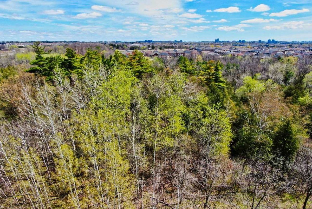 296 Upper Post Rd 296 Upper Post Rd Vaughan
