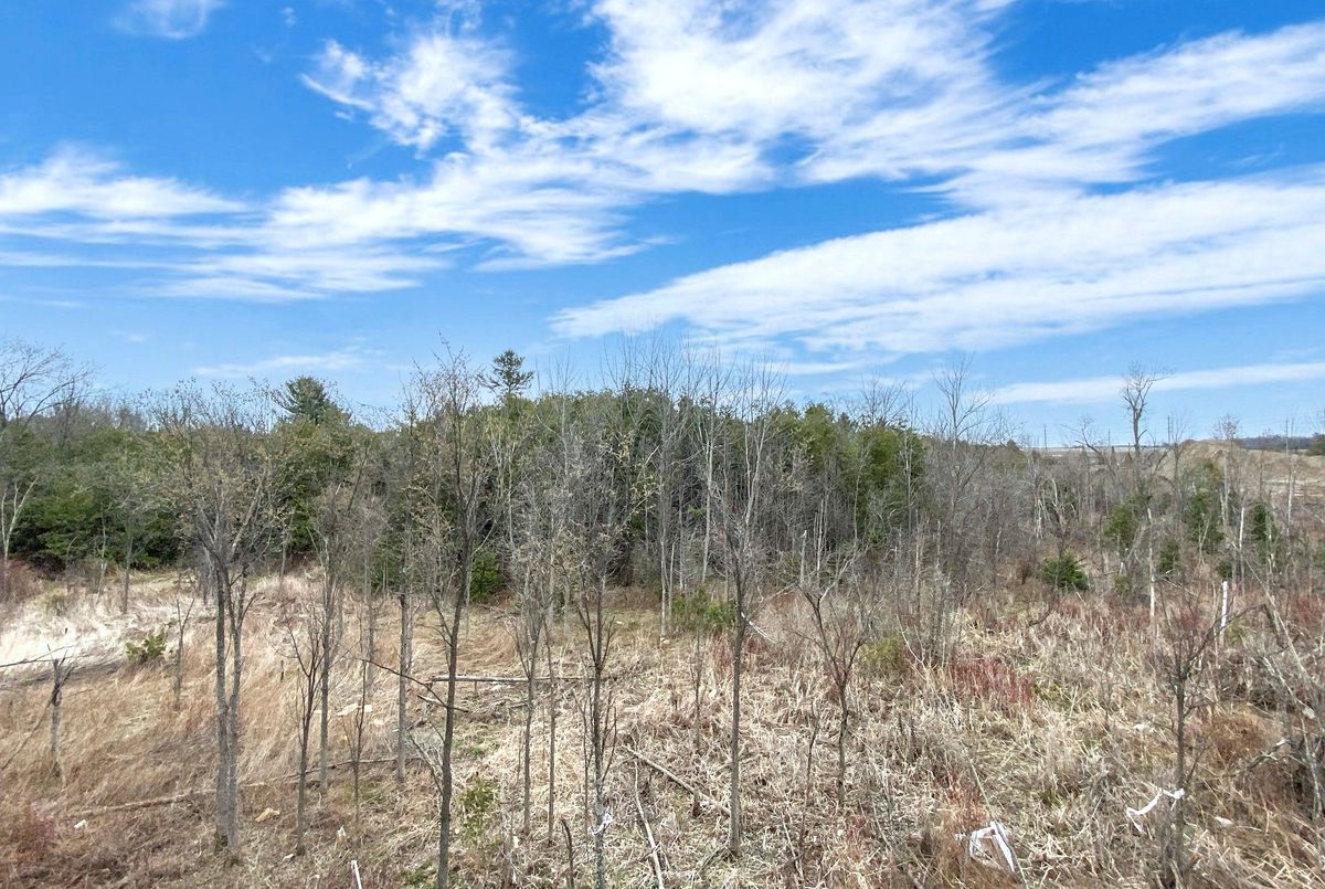 68 Blue Forest Crescent 68 Blue Forest Crescent Barrie