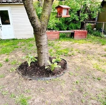 Residential Freehold 2266 Brookhurst Road Mississauga For {
  "AboveGradeFinishedArea": 0,
  "AboveGradeFinishedAreaSource": "",
  "AboveGradeFinishedAreaUnits": "",
  "Acreage": "",
  "Active": false,
  "Address": "2266 Brookhurst Road",
  "AirConditioning": "Central Air",
  "AirConditioningYN": false,
  "Amps": "",
  "Appliances": "",
  "ApproxAge": "",
  "ApproxSquareFootage": "1100-1500",
  "Area": "Peel",
  "AssessmentYear": "",
  "AssignmentYN": false,
  "AssociationAmenities": "",
  "AssociationFee": "",
  "AssociationFeeIncludes": "",
  "AssociationName": "",
  "AssociationYN": false,
  "Balcony": "",
  "Basement": "Finished",
  "BasementYN": false,
  "BathroomsFull": 0,
  "BathroomsHalf": 0,
  "Bedrooms": 3,
  "BedroomsDisplay": "3",
  "BedroomsPlus": 0,
  "BedroomsTotal": 3,
  "BelowGradeFinishedArea": 0,
  "BelowGradeFinishedAreaSource": "",
  "BelowGradeFinishedAreaUnits": "",
  "Board": "Toronto Regional Real Estate Board",
  "BuilderName": "",
  "BuildingAreaTotal": "",
  "BuildingAreaUnits": "",
  "BuildingName": "",
  "BusinessName": "",
  "BusinessType": "",
  "BuyerAgencyCompensation": "1/2 month",
  "BuyerAgencyCompensationType": "",
  "BuyerAgentAOR": "",
  "BuyerAgentEmail": "",
  "BuyerAgentFullName": "",
  "BuyerAgentId": "",
  "BuyerAgentMlsId": "",
  "BuyerAgentPhone": "",
  "BuyerOfficeId": "",
  "BuyerOfficeMlsId": "",
  "BuyerOfficeName": "",
  "BuyerOfficePhone": "",
  "CarportSpaces": 0,
  "Category": "MLS",
  "ChattelsYN": false,
  "City": "Mississauga",
  "ClassSearch": "Residential",
  "ClosedDate": "2025-07-01T00:00:00",
  "CoListAgentDesignation": "",
  "CoListAgentEmail": "",
  "CoListAgentID": "",
  "CoListAgentMLSID": "",
  "CoListAgentName": "",
  "CoListAgentPhone": "",
  "CoListOfficeID": "248510",
  "CoListOfficeMLSID": "248510",
  "CoListOfficeName": "CENTURY 21 HERITAGE GROUP LTD.",
  "CommercialCondoFee": "",
  "CommercialCondoFeeFrequency": "",
  "CommercialCondoFees": "",
  "Commission": "1/2 month",
  "Community": "Clarkson",
  "CommunityFeatures": "",
  "Condition": "",
  "ConditionOfSale": "",
  "CondoCorpNumber": "",
  "ConsentToAdvertiseYN": false,
  "ConstructionMaterials": "Aluminum Siding, Brick",
  "ContactAfterExpiryYN": false,
  "ContractDate": "2025-06-19T00:00:00",
  "Cooling": "Central Air",
  "CoolingYN": false,
  "Country": "CA",
  "CoverPhoto": "https://media.remarketer.ca/PROPTX/W12234113-1.jpg?tr=di-propertynoimage_pj5ksb5iM,f-jpg,q-90",
  "CrossStreet": "Southdown/Truscotts",
  "DaysOnMarket": 6,
  "DepositRequired": "True",
  "Directions": "Southdown/Truscotts",
  "Disclosures": "",
  "DisplayAddress": "2266 Brookhurst Road",
  "DisplayAddressYN": true,
  "DistributeToInternetYN": true,
  "Drive": "",
  "Electric": "",
  "ElectricExpense": "",
  "ElectricOnPropertyYN": false,
  "ElectricYN": false,
  "ElementarySchool": "",
  "ElevatorYN": false,
  "Exclusions": "",
  "Expenses": "",
  "ExpiryDate": "2025-09-19T00:00:00",
  "Exposure": "",
  "Exterior": "",
  "ExteriorFeatures": "",
  "Extras": "",
  "FamilyRoom": "",
  "FireplaceTotal": 0,
  "FireplaceYN": false,
  "Flooring": "",
  "FloorPlans": "",
  "FoundationDetails": "Concrete",
  "Franchise": "",
  "FranchiseYN": false,
  "FurnishedYN": false,
  "GarageSpaces": 0,
  "GarageType": "None",
  "GarageYN": false,
  "GasYN": false,
  "Geometry": {
    "lon": -79.640732,
    "lat": 43.512542
  },
  "GymYN": false,
  "HeatingYN": false,
  "HeatSource": "Gas",
  "HeatType": "Forced Air",
  "HighSchool": "",
  "HoldoverDays": "90",
  "id": "W12234113_PROPTX",
  "IDX": "Y",
  "IDXYN": true,
  "Inclusions": "S/S Dishwasher, S/S Refrigerator, Stove, Washer, Dryer. All light fixtures. Tenants Pay 100%of the utility.",
  "InteriorFeatures": "Carpet Free",
  "Kitchens": 1,
  "KitchensPlus": 0,
  "LandLeaseAmount": "",
  "LandLeaseYN": false,
  "LastStatus": "Lsd",
  "Latitude": 43.512542,
  "LaundryFeatures": "In Basement",
  "LaundryLevel": "",
  "Lease": "",
  "LeaseAgreement": "12 Months",
  "LeaseAgreementYN": true,
  "LeaseFrequency": "",
  "LeaseTerm": "12 Months",
  "LegalDescription": "",
  "Level": "",
  "ListAgentDesignation": "",
  "ListAgentEmail": "",
  "ListAgentID": "9584932",
  "ListAgentMLSID": "9584932",
  "ListAgentName": "KAMAL KANG, Salesperson",
  "ListAgentPhone": "",
  "ListAOR": "Toronto Regional Real Estate Board",
  "ListBrokerage": "CENTURY 21 HERITAGE GROUP LTD.",
  "ListingEntryDate": "2025-06-19T22:19:20",
  "ListingId": "W12234113",
  "ListingKey": "W12234113",
  "ListOfficeID": "248510",
  "ListOfficeMLSID": "248510",
  "ListOfficePhone": "",
  "ListPrice": 2850,
  "ListPricePerUnit": 0,
  "ListPriceUnit": "",
  "LivingArea": "1100-1500",
  "LivingAreaSource": "",
  "LivingAreaUnits": "",
  "Locker": "",
  "Longitude": -79.640732,
  "LotDepth": 128,
  "LotFeatures": "",
  "LotFront": 30,
  "LotIrregularities": "",
  "LotShape": "",
  "LotSizeArea": "",
  "LotSizeAreaUnits": "",
  "LotSizeCode": "Feet",
  "LotSizeDimensions": "",
  "Maintenance": "",
  "Media": [],
  "MediaChangeTimestamp": "2025-06-19T22:19:21",
  "MLS": "W12234113",
  "MLSLastStatus": "Leased",
  "MLSNumber": "W12234113",
  "MLSStatus": "Leased",
  "Municipality": "Mississauga",
  "MunicipalityDistrict": "Mississauga",
  "NewConstructionYN": false,
  "NumberOfBuildings": 0,
  "NumberOfUnitsTotal": 0,
  "OccupantType": "Vacant",
  "OpenHouses": [],
  "OpenHouseYN": false,
  "OriginalPrice": 2850,
  "OwnershipType": "",
  "ParcelNumber": "134350104",
  "ParkingIncludedYN": false,
  "ParkingSpaces": 3,
  "PaymentFrequency": "",
  "PaymentMethod": "",
  "PetsPermitted": "",
  "PetsPermittedYN": false,
  "PhotoCount": 34,
  "PictureYN": false,
  "PoolFeatures": "None",
  "PoolYN": true,
  "PossessionDate": "2025-07-01",
  "PostalCode": "L5J 1P9",
  "PreviousListPrice": 0,
  "PriceChange": false,
  "PriorMlsStatus": "Leased Conditional",
  "PrivateEntrance": "",
  "PrivateEntranceYN": false,
  "PrivateRemarks": "Easy to show with Lockbox. Immediate possession is available. This property is also listed on MLS For Sale",
  "PropertyAttachedYN": false,
  "PropertyCondition": "",
  "PropertyFeatures": "Library, Public Transit, Rec./Commun.Centre, School",
  "PropertyManagementCompany": "",
  "PropertyStyleSearch": "2 Storey",
  "PropertySubType": "Semi-Detached",
  "PropertySubTypeSearch": "Single Family",
  "PropertyType": "Residential Freehold",
  "PropertyTypeSearch": "Residential",
  "Province": "ON",
  "PublicRemarks": "Beautiful 3-bedroom, 2-bathroom semi-detached home available for Lease, perfectly situated in the serene and sought-after Clarkson neighborhood. The main level boasts stunning hardwood flooring, a spacious kitchen, a bright and inviting living room, and a separate dining area ideal for entertaining. Upstairs, you'll find generously sized bedrooms with hardwood floors and a well-appointed bathroom. Step outside to your private, fully fenced backyard oasis featuring a deck, and vibrant perennial garden. Whether you're hosting summer barbecues or enjoying a peaceful morning coffee, this outdoor space is perfect for relaxation and gatherings. The finished basement provides additional living space, offering a large recreation room, a second bathroom, laundry facilities, and ample storage. New Roof (2025). Additional features include parking for three cars and an unbeatable location! You're just a 10-minute walk to Clarkson GO Station, making commuting a breeze. Plus, enjoy close proximity to top-rated schools, preschools, parks, a community center, library, shopping, major highways, and all essential amenities. Vacant Property.",
  "PurchaseContractDate": "2025-06-25T00:00:00",
  "RemarksForClients": "Beautiful 3-bedroom, 2-bathroom semi-detached home available for Lease, perfectly situated in the serene and sought-after Clarkson neighborhood. The main level boasts stunning hardwood flooring, a spacious kitchen, a bright and inviting living room, and a separate dining area ideal for entertaining. Upstairs, you'll find generously sized bedrooms with hardwood floors and a well-appointed bathroom. Step outside to your private, fully fenced backyard oasis featuring a deck, and vibrant perennial garden. Whether you're hosting summer barbecues or enjoying a peaceful morning coffee, this outdoor space is perfect for relaxation and gatherings. The finished basement provides additional living space, offering a large recreation room, a second bathroom, laundry facilities, and ample storage. New Roof (2025). Additional features include parking for three cars and an unbeatable location! You're just a 10-minute walk to Clarkson GO Station, making commuting a breeze. Plus, enjoy close proximity to top-rated schools, preschools, parks, a community center, library, shopping, major highways, and all essential amenities. Vacant Property.",
  "Restricted": true,
  "RetirementYN": false,
  "RoadFrontageType": "",
  "RoadSurfaceType": "",
  "RollNumber": "210502004317200",
  "Roof": "Shingles",
  "Rooms": [],
  "RoomsAboveGrade": 9,
  "RoomsBelowGrade": 0,
  "RoomsTotal": 0,
  "RoomsYN": false,
  "RTimestampSql": "2026-03-01T20:13:27.14",
  "SaleLease": "Lease",
  "SalesBrochure": "",
  "Sauna": "",
  "SaunaYN": false,
  "Sewers": "Sewer",
  "ShowingInstruction": "Lockbox, See Brokerage Remarks",
  "SignOnPropertyYN": true,
  "Sold": true,
  "SoldDate": "2025-06-25T00:00:00",
  "SoldPrice": 2900,
  "Source": "PROPTX",
  "SourceSystemID": "A00001796",
  "SpaFeatures": "",
  "SpaYN": false,
  "SPLP": 102,
  "SqFtRangeMax": 1500,
  "SqFtRangeMin": 1100,
  "SqFtTotal": 0,
  "StandardStatus": "Closed",
  "Status": "U",
  "Stories": "",
  "StoriesTotal": "",
  "StreetAbbreviation": "",
  "StreetDirection": "",
  "StreetName": "Brookhurst",
  "StreetNumber": "2266",
  "StreetSuffix": "Road",
  "StreetSuffixCode": "",
  "StructureType": "",
  "Style": "2-Storey",
  "SubLeaseYN": false,
  "Summary": "listingkey:W12234113 | mls_number:W12234113 | address:2266 Brookhurst Road, Mississauga, ON L5J 1P9 | community:Clarkson | property_type:Residential Freehold | property_subtype:Semi-Detached | building_type:Semi-Detached | building_style:2-Storey | list_price:2850 | list_date:6/19/2025 10:19:20 PM | sold_price:2900 | sold_date:6/25/2025 12:00:00 AM | bed:3 | bath:2 | active:False | sold:True | source:PROPTX | transaction:Lease | listing_office:CENTURY 21 HERITAGE GROUP LTD. | thumbnail:https://media.remarketer.ca/PROPTX/W12234113-1.jpg?tr=di-propertynoimage_pj5ksb5iM,f-jpg,w-600,h-600,q-90,c-maintain_ratio,fo-center",
  "SurveyType": "None",
  "SurveyYear": "",
  "SurveyYN": false,
  "TaxAssessedValue": "",
  "Taxes": 0,
  "TaxLegalDescription": "",
  "TaxYear": "",
  "TenantPays": "",
  "Thumbnail": "https://media.remarketer.ca/PROPTX/W12234113-1.jpg?tr=di-propertynoimage_pj5ksb5iM,f-jpg,w-600,h-600,q-90,c-maintain_ratio,fo-center",
  "TimeShareYN": false,
  "TimestampSql": "2025-06-26T14:24:16",
  "TMI": "",
  "TotalArea": "",
  "TotalAreaUnit": "",
  "TotalParkingSpaces": 3,
  "Type": "Semi-Detached",
  "TypeSearch": "Semi-Detached",
  "UFFI": "",
  "UnitNumber": "",
  "Units": "",
  "UnparsedAddress": "2266 Brookhurst Road, Mississauga, ON L5J 1P9",
  "Use": "",
  "Utilities": "",
  "UtilityExpenses": "",
  "View": "",
  "VirtualTour3DURL": "",
  "VirtualTourURL": "",
  "VirtualTourURLUnbranded": "",
  "Volts": "",
  "Warranty": "",
  "WarrantyYN": false,
  "Washrooms": 2,
  "Water": "Municipal",
  "WaterBodyName": "",
  "WaterBodyType": "",
  "WaterExpense": "",
  "Waterfront": "",
  "WaterFrontage": "",
  "WaterFrontageFt": "",
  "WaterfrontYN": false,
  "WaterIncluded": "",
  "WaterSupplyTypes": "Municipal",
  "WaterView": "",
  "WaterYN": false,
  "WellCapacity": "",
  "WellCapacityUnits": "",
  "WellDepth": "",
  "WellDepthUnits": "",
  "Winterized": "",
  "YearBuilt": "",
  "Zoning": ""
}.(string)property[