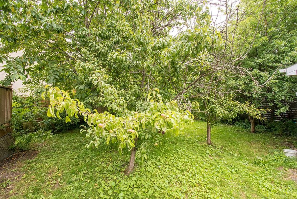 29 Roseland Drive 29 Roseland Drive Toronto W06