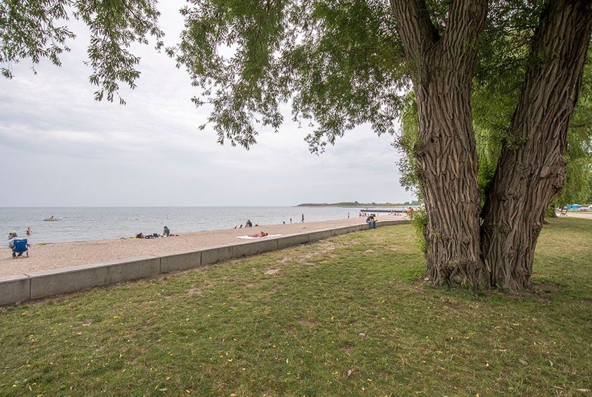 29 Roseland Drive 29 Roseland Drive Toronto W06