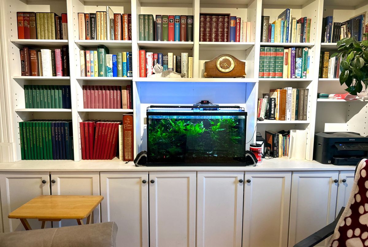 img-gallery