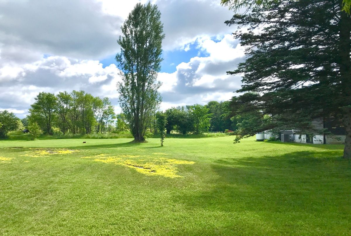 img-gallery