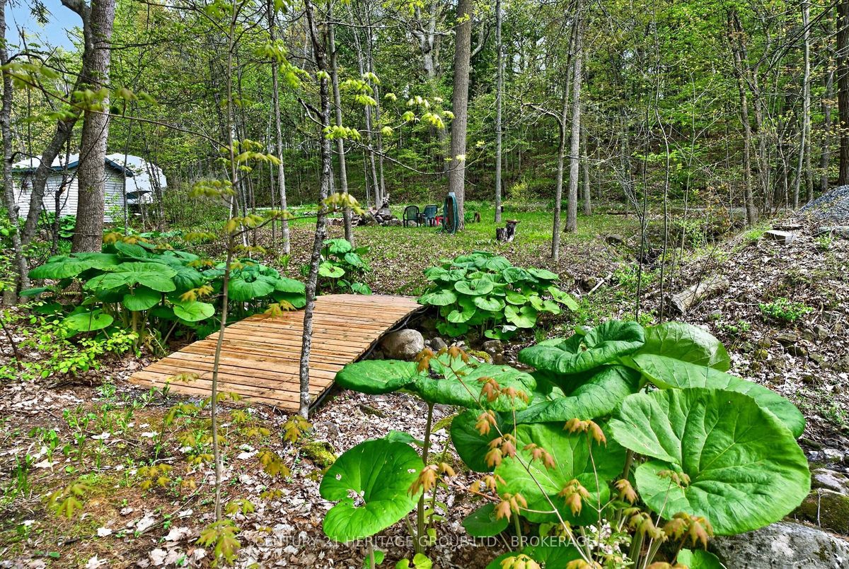 1726 Turcotte Lane 1726 Turcotte Lane Kingston
