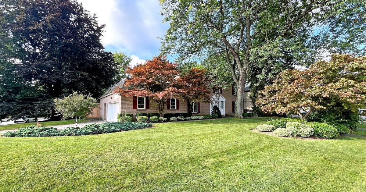 31 Saintfield Ave Toronto