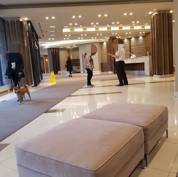 Condo 33 Bay Street Toronto For {
  "id": "C12180520-VOW",
  "Restricted": 0,
  "Active": 1,
  "Sold": 0,
  "Acreage": null,
  "Address": "33 Bay Street",
  "AirConditioning": "Central Air",
  "ApproxAge": "11-15",
  "ApproxSquareFootage": "600-699",
  "Area": "Toronto",
  "AreaCode": "",
  "Basement": "None",
  "Bedrooms": 1,
  "BedroomsPlus": 1,
  "Blob": "apostrophemlsphoto",
  "BuildingAmenities": "Concierge, Gym, Indoor Pool, Party Room/Meeting Room, Sauna, Tennis Court",
  "BuildingAreaTotal": "",
  "BuildingAreaUnits": "",
  "BuildingInsuranceIncluded": null,
  "Board": "Toronto Regional Real Estate Board",
  "ClassSearch": "Condo",
  "CentralVac": "False",
  "ClosedDate": "0001-01-01T00:00:00Z",
  "CoListAgentEmail": null,
  "CoListAgentID": "",
  "CoListAgentName": "",
  "CoListAgentDesignation": null,
  "CoListAgentPhone": "",
  "CoListOfficeID": null,
  "CoListOfficeName": "",
  "CommercialCondoFees": 0,
  "Community": "Waterfront Communities C1",
  "CommunityCode": null,
  "Condition": "",
  "ConditionalExpirydate": "0001-01-01T00:00:00Z",
  "ContractDate": "2025-05-29",
  "DaysOnMarket": 0,
  "DirectionsCrossStreets": "Bay/Harbour",
  "DisplayAddressOninternet": "True",
  "DistributeToInternetPortals": "True",
  "Elevator": "",
  "Extras": "",
  "ExpiryDate": "2025-10-28T00:00:00Z",
  "FireplaceStove": "False",
  "Furnished": "Partially",
  "GarageSpaces": 1,
  "GarageType": "Underground",
  "HeatType": "Forced Air",
  "HeatSource": "Gas",
  "IDX": "Y",
  "Kitchens": 1,
  "KitchensPlus": 0,
  "Latitude": 43.642651,
  "LastStatus": "New",
  "Lease": "",
  "LeaseFrequency": "Monthly",
  "LeaseTerm": "12 Months",
  "Level": null,
  "ListAgentEmail": null,
  "ListAgentID": "9572937",
  "ListAgentName": "BILL ZENG, Salesperson",
  "ListAgentDesignation": null,
  "ListAgentPhone": "",
  "ListBrokerage": "HOMELIFE LANDMARK REALTY INC.",
  "ListOfficeID": "063000",
  "ListOfficePhone": "",
  "ListAOR": null,
  "ListingEntryDate": "2025-05-29T04:25:40Z",
  "ListPrice": 2650,
  "Longitude": -79.377329,
  "LotDepth": 0,
  "LotFront": 0,
  "LotSizeCode": "",
  "MLS": "C12180520",
  "MLSNumber": "C12180520",
  "MLSStatus": "A",
  "MLSLastStatus": "New",
  "MoveInDate": "",
  "Municipality": "Toronto",
  "MunicipalityCode": "",
  "MunicipalityDistrict": "Toronto C01",
  "OpenHouseDate1": "0001-01-01T00:00:00Z",
  "OpenHouseDate2": "0001-01-01T00:00:00Z",
  "OpenHouseDate3": "0001-01-01T00:00:00Z",
  "OpenHouseFrom1": null,
  "OpenHouseFrom2": null,
  "OpenHouseFrom3": null,
  "OpenHouseTo1": null,
  "OpenHouseTo2": null,
  "OpenHouseTo3": null,
  "OriginalPrice": 2650,
  "ParkingSpaces": 1,
  "PetsPermitted": "Restricted",
  "PhotoCount": 30,
  "Pool": "",
  "PostalCode": "M5J 2Z3",
  "PropertyType": "Condo",
  "PropertyTypeSearch": "Residential",
  "PropertySubType": "Condo Apartment",
  "PropertySubTypeSearch": "Condo",
  "PropertyStyleSearch": "Apartment",
  "Province": "ON",
  "RemarksForClients": "Luxurious Pinnacle Centre in the heart of downtown. 38th-floor one bedroom + den (629 SF) with large balcony (89 SF) and locker. Parking included or excluded for $100 less! 9' ceiling. Hardwood flooring throughout. Floor-to-ceiling windows. Stunning city view. PATH entrance right across street! Walk to Union Station, Harbourfront & Financial & Entertainment District. Easy highway access! Exceptional 30,000 SF amenities: gym, pool, sauna, tennis/squash/basketball courts, BBQ, etc.",
  "Retirement": "0",
  "SaleLease": "Lease",
  "SoldDate": "0001-01-01T00:00:00Z",
  "SoldPrice": "",
  "Sewers": "",
  "Source": "VOW",
  "SPLP": 0,
  "SqFtTotal": null,
  "SqFtRangeMin": 600,
  "SqFtRangeMax": 699,
  "Status": "A",
  "StreetNumber": "33",
  "StreetAbbreviation": "Street",
  "StreetDirection": "",
  "StreetName": "Bay",
  "Style": "Apartment",
  "SuspendedDate": "0001-01-01T00:00:00Z",
  "Taxes": 0,
  "TaxYear": "",
  "TerminatedDate": "0001-01-01T00:00:00Z",
  "TimestampSql": "2025-05-29T04:25:40Z",
  "TotalArea": "0",
  "TotalParkingSpaces": 1,
  "Type": "Condo Apartment",
  "TypeSearch": "Apartment Unit",
  "UnitNumber": "3813",
  "VirtualTourURL": "",
  "Washrooms": 1,
  "Water": null,
  "Waterfront": "",
  "WaterIncluded": "",
  "YearBuilt": null,
  "Zoning": "",
  "Geometry": "43.642651,-79.377329",
  "RTimestampSql": "2025-05-29T04:55:01Z"
}.(string)property[