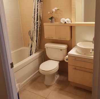 Condo 25 Carlton Street Toronto For {
  "id": "C12195188-VOW",
  "Restricted": 1,
  "Active": 0,
  "Sold": 1,
  "Acreage": null,
  "Address": "25 Carlton Street",
  "AirConditioning": "Central Air",
  "ApproxAge": "",
  "ApproxSquareFootage": "0-499",
  "Area": "Toronto",
  "AreaCode": "C08",
  "Basement": "None",
  "Bedrooms": 0,
  "BedroomsPlus": 0,
  "Blob": "apostrophemlsphoto",
  "BuildingAmenities": "Concierge, Exercise Room, Indoor Pool, Recreation Room, Visitor Parking",
  "BuildingAreaTotal": "",
  "BuildingAreaUnits": "",
  "BuildingInsuranceIncluded": null,
  "Board": "Toronto Regional Real Estate Board",
  "ClassSearch": "Condo",
  "CentralVac": "False",
  "ClosedDate": "2025-06-21T00:00:00Z",
  "CoListAgentEmail": null,
  "CoListAgentID": null,
  "CoListAgentName": null,
  "CoListAgentDesignation": null,
  "CoListAgentPhone": null,
  "CoListOfficeID": null,
  "CoListOfficeName": "",
  "CommercialCondoFees": 0,
  "Community": "Church-Yonge Corridor",
  "CommunityCode": null,
  "Condition": "",
  "ConditionalExpirydate": "0001-01-01T00:00:00Z",
  "ContractDate": "2025-06-03",
  "DaysOnMarket": 10,
  "DirectionsCrossStreets": "Yonge/College",
  "DisplayAddressOninternet": "True",
  "DistributeToInternetPortals": "True",
  "Elevator": "",
  "Extras": "",
  "ExpiryDate": "2025-09-02T00:00:00Z",
  "FireplaceStove": "False",
  "Furnished": "Furnished",
  "GarageSpaces": 0,
  "GarageType": "None",
  "HeatType": "Forced Air",
  "HeatSource": "Gas",
  "IDX": "Y",
  "Kitchens": 1,
  "KitchensPlus": 0,
  "Latitude": 43.661149,
  "LastStatus": "Lsd",
  "Lease": "",
  "LeaseFrequency": "Monthly",
  "LeaseTerm": "12 Months",
  "Level": null,
  "ListAgentEmail": null,
  "ListAgentID": null,
  "ListAgentName": null,
  "ListAgentDesignation": null,
  "ListAgentPhone": null,
  "ListBrokerage": "STARHOME REALTY INC",
  "ListOfficeID": "071800",
  "ListOfficePhone": null,
  "ListAOR": null,
  "ListingEntryDate": "2025-06-04T15:09:12Z",
  "ListPrice": 1950,
  "Longitude": -79.381629,
  "LotDepth": 0,
  "LotFront": 0,
  "LotSizeCode": "",
  "MLS": "C12195188",
  "MLSNumber": "C12195188",
  "MLSStatus": "U",
  "MLSLastStatus": "Lsd",
  "MoveInDate": "",
  "Municipality": "Toronto",
  "MunicipalityCode": "C08",
  "MunicipalityDistrict": "Toronto C08",
  "OpenHouseDate1": "0001-01-01T00:00:00Z",
  "OpenHouseDate2": "0001-01-01T00:00:00Z",
  "OpenHouseDate3": "0001-01-01T00:00:00Z",
  "OpenHouseFrom1": null,
  "OpenHouseFrom2": null,
  "OpenHouseFrom3": null,
  "OpenHouseTo1": null,
  "OpenHouseTo2": null,
  "OpenHouseTo3": null,
  "OriginalPrice": 1950,
  "ParkingSpaces": 0,
  "PetsPermitted": "Restricted",
  "PhotoCount": 8,
  "Pool": "",
  "PostalCode": "M5B 1L4",
  "PropertyType": "Condo",
  "PropertyTypeSearch": "Residential",
  "PropertySubType": "Condo Apartment",
  "PropertySubTypeSearch": "Condo",
  "PropertyStyleSearch": "Apartment",
  "Province": "ON",
  "RemarksForClients": "Spectacular Studio Suite In The Heart Of Downtown Toronto, Hardwood Flooring Throughout. Floor To Ceiling Windows, Steps To College Station, Supermarket, Eaton Centre. Street Car At Your Door Step, Minutes To U Of T, Toronto Metropolitan University And Hospitals. Everything You Need Is Right At Hand. Perfect For Young Professionals, Students. Suite Is Fully Furnished. Just Bring Your Luggage.",
  "Retirement": "0",
  "SaleLease": "Lease",
  "SoldDate": "2025-06-13T00:00:00Z",
  "SoldPrice": "1900",
  "Sewers": "",
  "Source": "VOW",
  "SPLP": 97,
  "SqFtTotal": null,
  "SqFtRangeMin": 0,
  "SqFtRangeMax": 499,
  "Status": "U",
  "StreetNumber": "25",
  "StreetAbbreviation": "Street",
  "StreetDirection": "",
  "StreetName": "Carlton",
  "Style": "Apartment",
  "SuspendedDate": "0001-01-01T00:00:00Z",
  "Taxes": 0,
  "TaxYear": "",
  "TerminatedDate": "0001-01-01T00:00:00Z",
  "TimestampSql": "2025-06-13T15:29:26Z",
  "TotalArea": "0",
  "TotalParkingSpaces": 0,
  "Type": "Condo Apartment",
  "TypeSearch": "Apartment Unit",
  "UnitNumber": "1509",
  "VirtualTourURL": "",
  "Washrooms": 1,
  "Water": null,
  "Waterfront": "",
  "WaterIncluded": "",
  "YearBuilt": null,
  "Zoning": "",
  "Geometry": "43.661149,-79.381629",
  "RTimestampSql": "2025-06-13T15:55:16Z"
}.(string)property[