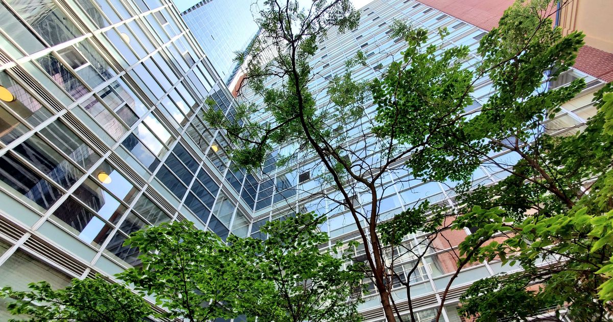 11 St Joseph Street Toronto