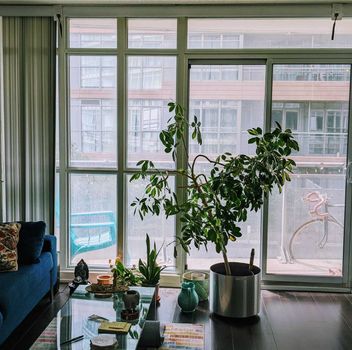 Condo 21 Iceboat Terrace Toronto For {
  "id": "C12277087-VOW",
  "Restricted": 0,
  "Active": 1,
  "Sold": 0,
  "Acreage": null,
  "Address": "21 Iceboat Terrace",
  "AirConditioning": "Central Air",
  "ApproxAge": "",
  "ApproxSquareFootage": "700-799",
  "Area": "Toronto",
  "AreaCode": "C01",
  "Basement": "None",
  "Bedrooms": 1,
  "BedroomsPlus": 1,
  "Blob": "apostrophemlsphoto",
  "BuildingAmenities": "Concierge, Game Room, Guest Suites, Gym, Indoor Pool, Party Room/Meeting Room",
  "BuildingAreaTotal": "",
  "BuildingAreaUnits": "",
  "BuildingInsuranceIncluded": null,
  "Board": "Toronto Regional Real Estate Board",
  "ClassSearch": "Condo",
  "CentralVac": "False",
  "ClosedDate": "0001-01-01T00:00:00Z",
  "CoListAgentEmail": null,
  "CoListAgentID": null,
  "CoListAgentName": null,
  "CoListAgentDesignation": null,
  "CoListAgentPhone": null,
  "CoListOfficeID": null,
  "CoListOfficeName": "PREMIER MATRIX REALTY LTD.",
  "CommercialCondoFees": 0,
  "Community": "Waterfront Communities C1",
  "CommunityCode": null,
  "Condition": "",
  "ConditionalExpirydate": "0001-01-01T00:00:00Z",
  "ContractDate": "2025-07-10",
  "DaysOnMarket": 0,
  "DirectionsCrossStreets": "Spadina/Fort York",
  "DisplayAddressOninternet": "True",
  "DistributeToInternetPortals": "True",
  "Elevator": "True",
  "Extras": "",
  "ExpiryDate": "2025-11-30T00:00:00Z",
  "FireplaceStove": "False",
  "Furnished": "",
  "GarageSpaces": 0,
  "GarageType": "Underground",
  "HeatType": "Forced Air",
  "HeatSource": "Gas",
  "IDX": "Y",
  "Kitchens": 1,
  "KitchensPlus": 0,
  "Latitude": 43.640454,
  "LastStatus": "New",
  "Lease": "",
  "LeaseFrequency": "",
  "LeaseTerm": "",
  "Level": null,
  "ListAgentEmail": null,
  "ListAgentID": null,
  "ListAgentName": null,
  "ListAgentDesignation": null,
  "ListAgentPhone": null,
  "ListBrokerage": "PREMIER MATRIX REALTY LTD.",
  "ListOfficeID": "143400",
  "ListOfficePhone": null,
  "ListAOR": null,
  "ListingEntryDate": "2025-07-10T19:06:05Z",
  "ListPrice": 579990,
  "Longitude": -79.397393,
  "LotDepth": 0,
  "LotFront": 0,
  "LotSizeCode": "",
  "MLS": "C12277087",
  "MLSNumber": "C12277087",
  "MLSStatus": "A",
  "MLSLastStatus": "New",
  "MoveInDate": "",
  "Municipality": "Toronto",
  "MunicipalityCode": "C01",
  "MunicipalityDistrict": "Toronto C01",
  "OpenHouseDate1": "0001-01-01T00:00:00Z",
  "OpenHouseDate2": "0001-01-01T00:00:00Z",
  "OpenHouseDate3": "0001-01-01T00:00:00Z",
  "OpenHouseFrom1": null,
  "OpenHouseFrom2": null,
  "OpenHouseFrom3": null,
  "OpenHouseTo1": null,
  "OpenHouseTo2": null,
  "OpenHouseTo3": null,
  "OriginalPrice": 579990,
  "ParkingSpaces": 1,
  "PetsPermitted": "Restricted",
  "PhotoCount": 12,
  "Pool": "",
  "PostalCode": "M5V 4A9",
  "PropertyType": "Condo",
  "PropertyTypeSearch": "Residential",
  "PropertySubType": "Condo Apartment",
  "PropertySubTypeSearch": "Condo",
  "PropertyStyleSearch": "Apartment",
  "Province": "ON",
  "RemarksForClients": "Welcome To The Heart Of Downtown Toronto! Bright & Spacious 1+Den W/A Layout That Actually Makes Sense! Floor-To-Ceiling Windows W/Tons Of Natural Light & One Of The Larger 1+Dens In The Building! Den Allows For Extra Office Space For Those Working From Home Or A Cozy Reading Nook! Perfect For A First-Time Buyer Or Investor As The Location Cannot Be Beat! Includes Parking & Locker.",
  "Retirement": "False",
  "SaleLease": "Sale",
  "SoldDate": "0001-01-01T00:00:00Z",
  "SoldPrice": "",
  "Sewers": "",
  "Source": "VOW",
  "SPLP": 0,
  "SqFtTotal": null,
  "SqFtRangeMin": 700,
  "SqFtRangeMax": 799,
  "Status": "A",
  "StreetNumber": "21",
  "StreetAbbreviation": "Terrace",
  "StreetDirection": "",
  "StreetName": "Iceboat",
  "Style": "Apartment",
  "SuspendedDate": "0001-01-01T00:00:00Z",
  "Taxes": 1621.45,
  "TaxYear": "2025",
  "TerminatedDate": "0001-01-01T00:00:00Z",
  "TimestampSql": "2025-07-10T19:06:05Z",
  "TotalArea": "0",
  "TotalParkingSpaces": 1,
  "Type": "Condo Apartment",
  "TypeSearch": "Apartment Unit",
  "UnitNumber": "330",
  "VirtualTourURL": "",
  "Washrooms": 1,
  "Water": null,
  "Waterfront": "",
  "WaterIncluded": "",
  "YearBuilt": null,
  "Zoning": "Residential",
  "Geometry": "43.640454,-79.397393",
  "RTimestampSql": "2025-07-10T19:55:01Z"
}.(string)property[