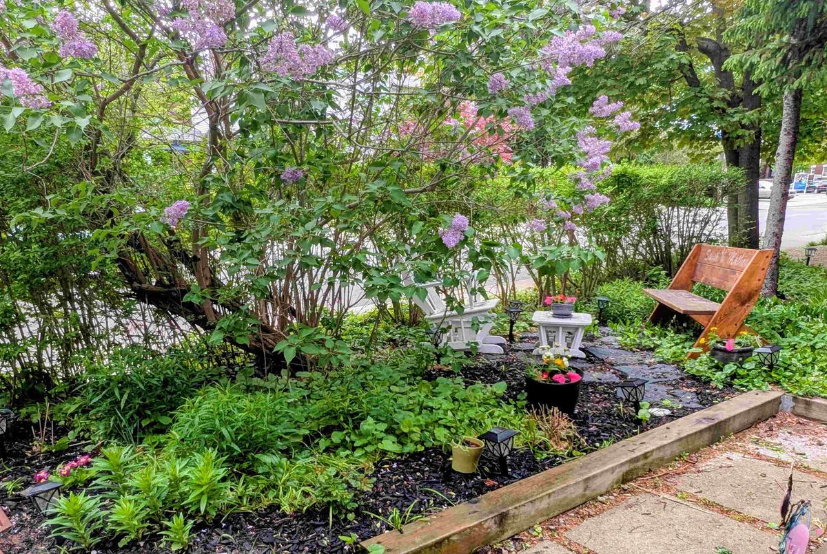 319 Wychwood Avenue Toronto 319 Wychwood Avenue Toronto