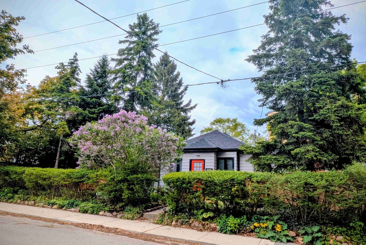 319 Wychwood Avenue Toronto 319 Wychwood Avenue Toronto