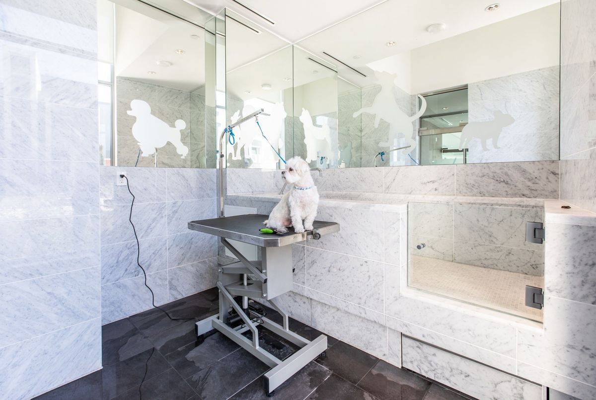 115 McMahon Drive Toronto 115 McMahon Drive Toronto