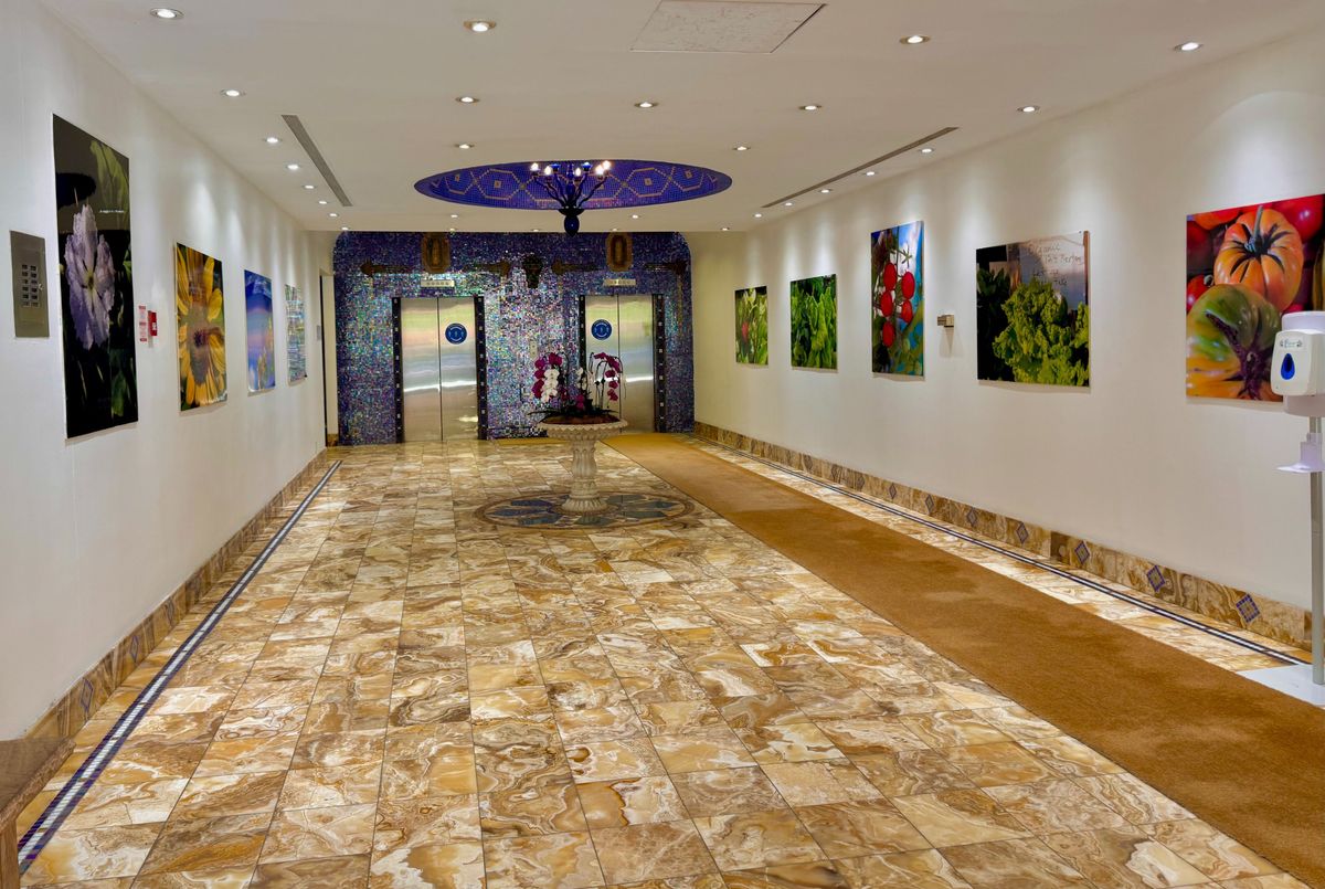 img-gallery