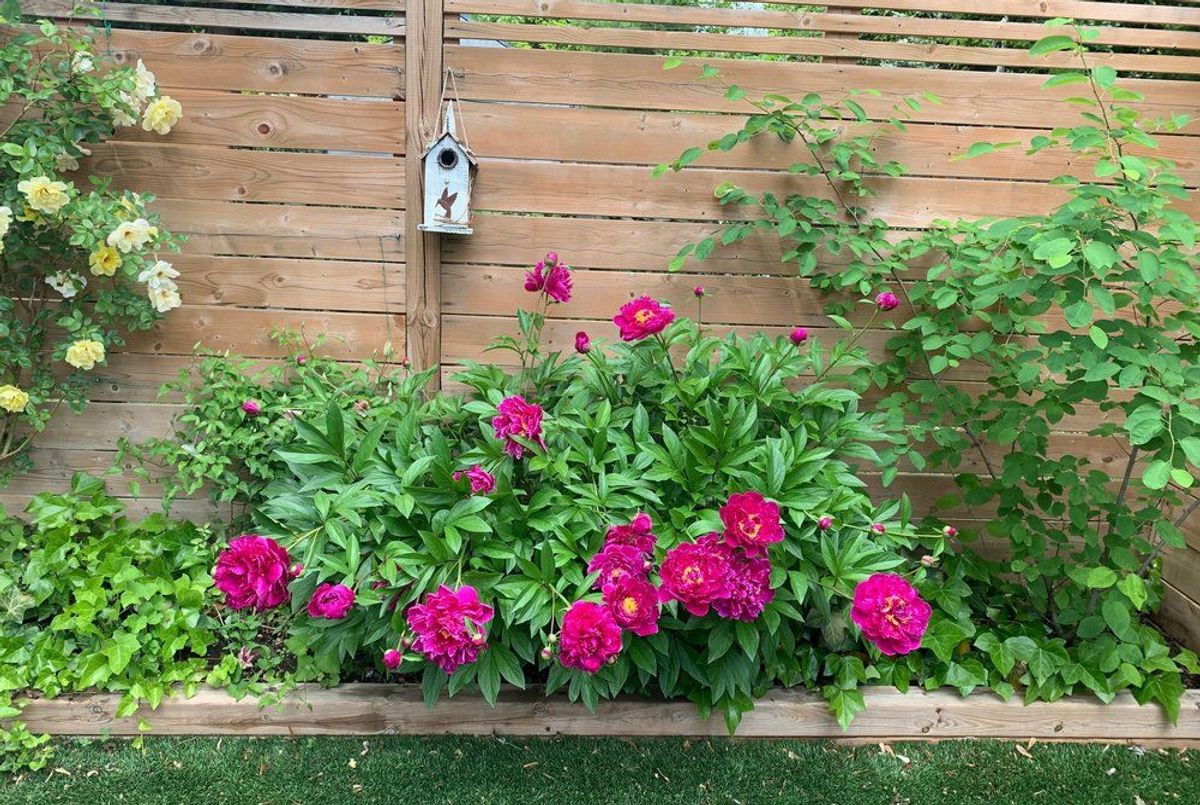 554 Balliol Street Toronto 554 Balliol Street Toronto