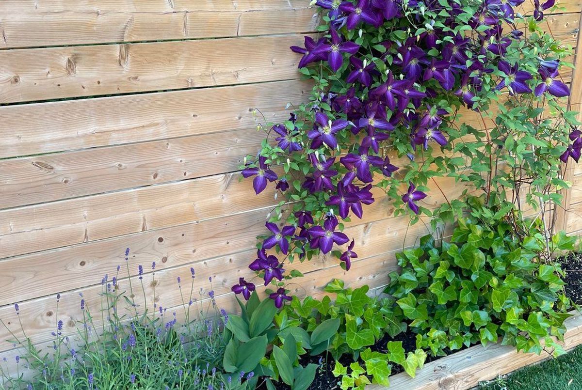 554 Balliol Street Toronto 554 Balliol Street Toronto