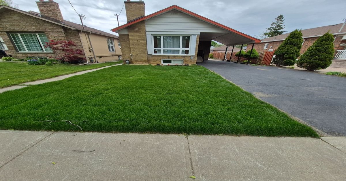 1393 Birchmount Road Toronto